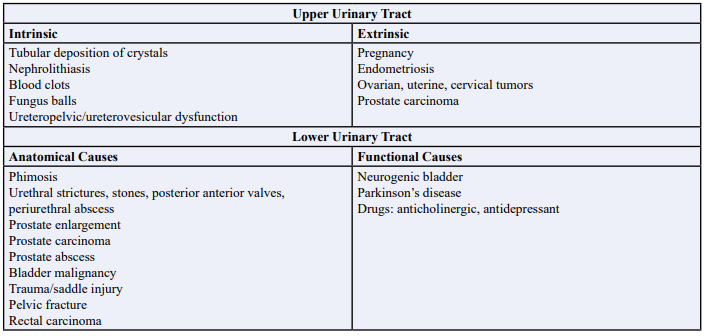 Table 1: Causes of Obstructive Nephropathy: Upper Urinary Tract and Lower Urinary Tract.