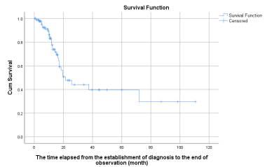 Figure 1: Kaplan-Meier graph of the survival of the 93 pancreatic cancer patients showing a 21.5 (95% CI: 12.6 Ã?Â??Ã?Â???Ã?Â??Ã?Â????Ã?Â??Ã?Â???Ã?Â??Ã?Â?????Ã?Â??Ã?Â???Ã?Â??Ã?Â????Ã?Â??Ã?Â???Ã?Â??Ã?Â??????Ã?Â??Ã?Â???Ã?Â??Ã?Â????Ã?Â??Ã?Â???Ã?Â??Ã?Â?????Ã?Â??Ã?Â???Ã?Â??Ã?Â????Ã?Â??Ã?Â???Ã?Â??Ã?Â???????Ã?Â??Ã?Â???Ã?Â??Ã?Â????Ã?Â??Ã?Â???Ã?Â??Ã?Â?????Ã?Â??Ã?Â???Ã?Â??Ã?Â????Ã?Â??Ã?Â???Ã?Â??Ã?Â??????Ã?Â??Ã?Â???Ã?Â??Ã?Â????Ã?Â??Ã?Â???Ã?Â??Ã?Â?????Ã?Â??Ã?Â???Ã?Â??Ã?Â????Ã?Â??Ã?Â???Ã?Â??Ã?Â????????Ã?Â??Ã?Â???Ã?Â??Ã?Â????Ã?Â??Ã?Â???Ã?Â??Ã?Â?????Ã?Â??Ã?Â???Ã?Â??Ã?Â????Ã?Â??Ã?Â???Ã?Â??Ã?Â??????Ã?Â??Ã?Â???Ã?Â??Ã?Â????Ã?Â??Ã?Â???Ã?Â??Ã?Â?????Ã?Â??Ã?Â???Ã?Â??Ã?Â????Ã?Â??Ã?Â???Ã?Â??Ã?Â???????Ã?Â??Ã?Â???Ã?Â??Ã?Â????Ã?Â??Ã?Â???Ã?Â??Ã?Â?????Ã?Â??Ã?Â???Ã?Â??Ã?Â????Ã?Â??Ã?Â???Ã?Â??Ã?Â??????Ã?Â??Ã?Â???Ã?Â??Ã?Â????Ã?Â??Ã?Â???Ã?Â??Ã?Â?????Ã?Â??Ã?Â???Ã?Â??Ã?Â????Ã?Â??Ã?Â???Ã?Â??Ã?Â?????????Ã?Â??Ã?Â???Ã?Â??Ã?Â????Ã?Â??Ã?Â???Ã?Â??Ã?Â?????Ã?Â??Ã?Â???Ã?Â??Ã?Â????Ã?Â??Ã?Â???Ã?Â??Ã?Â??????Ã?Â??Ã?Â???Ã?Â??Ã?Â????Ã?Â??Ã?Â???Ã?Â??Ã?Â?????Ã?Â??Ã?Â???Ã?Â??Ã?Â????Ã?Â??Ã?Â???Ã?Â??Ã?Â???????Ã?Â??Ã?Â???Ã?Â??Ã?Â????Ã?Â??Ã?Â???Ã?Â??Ã?Â?????Ã?Â??Ã?Â???Ã?Â??Ã?Â????Ã?Â??Ã?Â???Ã?Â??Ã?Â??????Ã?Â??Ã?Â???Ã?Â??Ã?Â????Ã?Â??Ã?Â???Ã?Â??Ã?Â?????Ã?Â??Ã?Â???Ã?Â??Ã?Â????Ã?Â??Ã?Â???Ã?Â??Ã?Â????????Ã?Â??Ã?Â???Ã?Â??Ã?Â????Ã?Â??Ã?Â???Ã?Â??Ã?Â?????Ã?Â??Ã?Â???Ã?Â??Ã?Â????Ã?Â??Ã?Â???Ã?Â??Ã?Â??????Ã?Â??Ã?Â???Ã?Â??Ã?Â????Ã?Â??Ã?Â???Ã?Â??Ã?Â?????Ã?Â??Ã?Â???Ã?Â??Ã?Â????Ã?Â??Ã?Â???Ã?Â??Ã?Â???????Ã?Â??Ã?Â???Ã?Â??Ã?Â????Ã?Â??Ã?Â???Ã?Â??Ã?Â?????Ã?Â??Ã?Â???Ã?Â??Ã?Â????Ã?Â??Ã?Â???Ã?Â??Ã?Â??????Ã?Â??Ã?Â???Ã?Â??Ã?Â????Ã?Â??Ã?Â???Ã?Â??Ã?Â?????Ã?Â??Ã?Â???Ã?Â??Ã?Â????Ã?Â??Ã?Â???Ã?Â??Ã?Â??????????Ã?Â??Ã?Â???Ã?Â??Ã?Â????Ã?Â??Ã?Â???Ã?Â??Ã?Â?????Ã?Â??Ã?Â???Ã?Â??Ã?Â????Ã?Â??Ã?Â???Ã?Â??Ã?Â??????Ã?Â??Ã?Â???Ã?Â??Ã?Â????Ã?Â??Ã?Â???Ã?Â??Ã?Â?????Ã?Â??Ã?Â???Ã?Â??Ã?Â????Ã?Â??Ã?Â???Ã?Â??Ã?Â???????Ã?Â??Ã?Â???Ã?Â??Ã?Â????Ã?Â??Ã?Â???Ã?Â??Ã?Â?????Ã?Â??Ã?Â???Ã?Â??Ã?Â????Ã?Â??Ã?Â???Ã?Â??Ã?Â??????Ã?Â??Ã?Â???Ã?Â??Ã?Â????Ã?Â??Ã?Â???Ã?Â??Ã?Â?????Ã?Â??Ã?Â???Ã?Â??Ã?Â????Ã?Â??Ã?Â???Ã?Â??Ã?Â????????Ã?Â??Ã?Â???Ã?Â??Ã?Â????Ã?Â??Ã?Â???Ã?Â??Ã?Â?????Ã?Â??Ã?Â???Ã?Â??Ã?Â????Ã?Â??Ã?Â???Ã?Â??Ã?Â??????Ã?Â??Ã?Â???Ã?Â??Ã?Â????Ã?Â??Ã?Â???Ã?Â??Ã?Â?????Ã?Â??Ã?Â???Ã?Â??Ã?Â????Ã?Â??Ã?Â???Ã?Â??Ã?Â???????Ã?Â??Ã?Â???Ã?Â??Ã?Â????Ã?Â??Ã?Â???Ã?Â??Ã?Â?????Ã?Â??Ã?Â???Ã?Â??Ã?Â????Ã?Â??Ã?Â???Ã?Â??Ã?Â??????Ã?Â??Ã?Â???Ã?Â??Ã?Â????Ã?Â??Ã?Â???Ã?Â??Ã?Â?????Ã?Â??Ã?Â???Ã?Â??Ã?Â????Ã?Â??Ã?Â???Ã?Â??Ã?Â?????????Ã?Â??Ã?Â???Ã?Â??Ã?Â????Ã?Â??Ã?Â???Ã?Â??Ã?Â?????Ã?Â??Ã?Â???Ã?Â??Ã?Â????Ã?Â??Ã?Â???Ã?Â??Ã?Â??????Ã?Â??Ã?Â???Ã?Â??Ã?Â????Ã?Â??Ã?Â???Ã?Â??Ã?Â?????Ã?Â??Ã?Â???Ã?Â??Ã?Â????Ã?Â??Ã?Â???Ã?Â??Ã?Â???????Ã?Â??Ã?Â???Ã?Â??Ã?Â????Ã?Â??Ã?Â???Ã?Â??Ã?Â?????Ã?Â??Ã?Â???Ã?Â??Ã?Â????Ã?Â??Ã?Â???Ã?Â??Ã?Â??????Ã?Â??Ã?Â???Ã?Â??Ã?Â????Ã?Â??Ã?Â???Ã?Â??Ã?Â?????Ã?Â??Ã?Â???Ã?Â??Ã?Â????Ã?Â??Ã?Â???Ã?Â??Ã?Â????????Ã?Â??Ã?Â???Ã?Â??Ã?Â????Ã?Â??Ã?Â???Ã?Â??Ã?Â?????Ã?Â??Ã?Â???Ã?Â??Ã?Â????Ã?Â??Ã?Â???Ã?Â??Ã?Â??????Ã?Â??Ã?Â???Ã?Â??Ã?Â????Ã?Â??Ã?Â???Ã?Â??Ã?Â?????Ã?Â??Ã?Â???Ã?Â??Ã?Â????Ã?Â??Ã?Â???Ã?Â??Ã?Â???????Ã?Â??Ã?Â???Ã?Â??Ã?Â????Ã?Â??Ã?Â???Ã?Â??Ã?Â?????Ã?Â??Ã?Â???Ã?Â??Ã?Â????Ã?Â??Ã?Â???Ã?Â??Ã?Â??????Ã?Â??Ã?Â???Ã?Â??Ã?Â????Ã?Â??Ã?Â???Ã?Â??Ã?Â?????Ã?Â??Ã?Â???Ã?Â??Ã?Â????Ã?Â??Ã?Â???Ã?Â??Ã?Â???????????Ã?Â??Ã?Â???Ã?Â??Ã?Â????Ã?Â??Ã?Â???Ã?Â??Ã?Â?????Ã?Â??Ã?Â???Ã?Â??Ã?Â????Ã?Â??Ã?Â???Ã?Â??Ã?Â??????Ã?Â??Ã?Â???Ã?Â??Ã?Â????Ã?Â??Ã?Â???Ã?Â??Ã?Â?????Ã?Â??Ã?Â???Ã?Â??Ã?Â????Ã?Â??Ã?Â???Ã?Â??Ã?Â???????Ã?Â??Ã?Â???Ã?Â??Ã?Â????Ã?Â??Ã?Â???Ã?Â??Ã?Â?????Ã?Â??Ã?Â???Ã?Â??Ã?Â????Ã?Â??Ã?Â???Ã?Â??Ã?Â??????Ã?Â??Ã?Â???Ã?Â??Ã?Â????Ã?Â??Ã?Â???Ã?Â??Ã?Â?????Ã?Â??Ã?Â???Ã?Â??Ã?Â????Ã?Â??Ã?Â???Ã?Â??Ã?Â????????Ã?Â??Ã?Â???Ã?Â??Ã?Â????Ã?Â??Ã?Â???Ã?Â??Ã?Â?????Ã?Â??Ã?Â???Ã?Â??Ã?Â????Ã?Â??Ã?Â???Ã?Â??Ã?Â??????Ã?Â??Ã?Â???Ã?Â??Ã?Â????Ã?Â??Ã?Â???Ã?Â??Ã?Â?????Ã?Â??Ã?Â???Ã?Â??Ã?Â????Ã?Â??Ã?Â???Ã?Â??Ã?Â???????Ã?Â??Ã?Â???Ã?Â??Ã?Â????Ã?Â??Ã?Â???Ã?Â??Ã?Â?????Ã?Â??Ã?Â???Ã?Â??Ã?Â????Ã?Â??Ã?Â???Ã?Â??Ã?Â??????Ã?Â??Ã?Â???Ã?Â??Ã?Â????Ã?Â??Ã?Â???Ã?Â??Ã?Â?????Ã?Â??Ã?Â???Ã?Â??Ã?Â????Ã?Â??Ã?Â???Ã?Â??Ã?Â?????????Ã?Â??Ã?Â???Ã?Â??Ã?Â????Ã?Â??Ã?Â???Ã?Â??Ã?Â?????Ã?Â??Ã?Â???Ã?Â??Ã?Â????Ã?Â??Ã?Â???Ã?Â??Ã?Â??????Ã?Â??Ã?Â???Ã?Â??Ã?Â????Ã?Â??Ã?Â???Ã?Â??Ã?Â?????Ã?Â??Ã?Â???Ã?Â??Ã?Â????Ã?Â??Ã?Â???Ã?Â??Ã?Â???????Ã?Â??Ã?Â???Ã?Â??Ã?Â????Ã?Â??Ã?Â???Ã?Â??Ã?Â?????Ã?Â??Ã?Â???Ã?Â??Ã?Â????Ã?Â??Ã?Â???Ã?Â??Ã?Â??????Ã?Â??Ã?Â???Ã?Â??Ã?Â????Ã?Â??Ã?Â???Ã?Â??Ã?Â?????Ã?Â??Ã?Â???Ã?Â??Ã?Â????Ã?Â??Ã?Â???Ã?Â??Ã?Â????????Ã?Â??Ã?Â???Ã?Â??Ã?Â????Ã?Â??Ã?Â???Ã?Â??Ã?Â?????Ã?Â??Ã?Â???Ã?Â??Ã?Â????Ã?Â??Ã?Â???Ã?Â??Ã?Â??????Ã?Â??Ã?Â???Ã?Â??Ã?Â????Ã?Â??Ã?Â???Ã?Â??Ã?Â?????Ã?Â??Ã?Â???Ã?Â??Ã?Â????Ã?Â??Ã?Â???Ã?Â??Ã?Â???????Ã?Â??Ã?Â???Ã?Â??Ã?Â????Ã?Â??Ã?Â???Ã?Â??Ã?Â?????Ã?Â??Ã?Â???Ã?Â??Ã?Â????Ã?Â??Ã?Â???Ã?Â??Ã?Â??????Ã?Â??Ã?Â???Ã?Â??Ã?Â????Ã?Â??Ã?Â???Ã?Â??Ã?Â?????Ã?Â??Ã?Â???Ã?Â??Ã?Â????Ã?Â??Ã?Â???Ã?Â??Ã?Â??????????Ã?Â??Ã?Â???Ã?Â??Ã?Â????Ã?Â??Ã?Â???Ã?Â??Ã?Â?????Ã?Â??Ã?Â???Ã?Â??Ã?Â????Ã?Â??Ã?Â???Ã?Â??Ã?Â??????Ã?Â??Ã?Â???Ã?Â??Ã?Â????Ã?Â??Ã?Â???Ã?Â??Ã?Â?????Ã?Â??Ã?Â???Ã?Â??Ã?Â????Ã?Â??Ã?Â???Ã?Â??Ã?Â???????Ã?Â??Ã?Â???Ã?Â??Ã?Â????Ã?Â??Ã?Â???Ã?Â??Ã?Â?????Ã?Â??Ã?Â???Ã?Â??Ã?Â????Ã?Â??Ã?Â???Ã?Â??Ã?Â??????Ã?Â??Ã?Â???Ã?Â??Ã?Â????Ã?Â??Ã?Â???Ã?Â??Ã?Â?????Ã?Â??Ã?Â???Ã?Â??Ã?Â????Ã?Â??Ã?Â???Ã?Â??Ã?Â????????Ã?Â??Ã?Â???Ã?Â??Ã?Â????Ã?Â??Ã?Â???Ã?Â??Ã?Â?????Ã?Â??Ã?Â???Ã?Â??Ã?Â????Ã?Â??Ã?Â???Ã?Â??Ã?Â??????Ã?Â??Ã?Â???Ã?Â??Ã?Â????Ã?Â??Ã?Â???Ã?Â??Ã?Â?????Ã?Â??Ã?Â???Ã?Â??Ã?Â????Ã?Â??Ã?Â???Ã?Â??Ã?Â???????Ã?Â??Ã?Â???Ã?Â??Ã?Â????Ã?Â??Ã?Â???Ã?Â??Ã?Â?????Ã?Â??Ã?Â???Ã?Â??Ã?Â????Ã?Â??Ã?Â???Ã?Â??Ã?Â??????Ã?Â??Ã?Â???Ã?Â??Ã?Â????Ã?Â??Ã?Â???Ã?Â??Ã?Â?????Ã?Â??Ã?Â???Ã?Â??Ã?Â????Ã?Â??Ã?Â???Ã?Â??Ã?Â?????????Ã?Â??Ã?Â???Ã?Â??Ã?Â????Ã?Â??Ã?Â???Ã?Â??Ã?Â?????Ã?Â??Ã?Â???Ã?Â??Ã?Â????Ã?Â??Ã?Â???Ã?Â??Ã?Â??????Ã?Â??Ã?Â???Ã?Â??Ã?Â????Ã?Â??Ã?Â???Ã?Â??Ã?Â?????Ã?Â??Ã?Â???Ã?Â??Ã?Â????Ã?Â??Ã?Â???Ã?Â??Ã?Â???????Ã?Â??Ã?Â???Ã?Â??Ã?Â????Ã?Â??Ã?Â???Ã?Â??Ã?Â?????Ã?Â??Ã?Â???Ã?Â??Ã?Â????Ã?Â??Ã?Â???Ã?Â??Ã?Â??????Ã?Â??Ã?Â???Ã?Â??Ã?Â????Ã?Â??Ã?Â???Ã?Â??Ã?Â?????Ã?Â??Ã?Â???Ã?Â??Ã?Â????Ã?Â??Ã?Â???Ã?Â??Ã?Â????????Ã?Â??Ã?Â???Ã?Â??Ã?Â????Ã?Â??Ã?Â???Ã?Â??Ã?Â?????Ã?Â??Ã?Â???Ã?Â??Ã?Â????Ã?Â??Ã?Â???Ã?Â??Ã?Â??????Ã?Â??Ã?Â???Ã?Â??Ã?Â????Ã?Â??Ã?Â???Ã?Â??Ã?Â?????Ã?Â??Ã?Â???Ã?Â??Ã?Â????Ã?Â??Ã?Â???Ã?Â??Ã?Â???????Ã?Â??Ã?Â???Ã?Â??Ã?Â????Ã?Â??Ã?Â???Ã?Â??Ã?Â?????Ã?Â??Ã?Â???Ã?Â??Ã?Â????Ã?Â??Ã?Â???Ã?Â??Ã?Â??????Ã?Â??Ã?Â???Ã?Â??Ã?Â????Ã?Â??Ã?Â???Ã?Â??Ã?Â?????Ã?Â??Ã?Â???Ã?Â??Ã?Â????Ã?Â??Ã?Â???Ã?Â??Ã?Â????????????Ã?Â??Ã?Â???Ã?Â??Ã?Â????Ã?Â??Ã?Â???Ã?Â??Ã?Â?????Ã?Â??Ã?Â???Ã?Â??Ã?Â????Ã?Â??Ã?Â???Ã?Â??Ã?Â??????Ã?Â??Ã?Â???Ã?Â??Ã?Â????Ã?Â??Ã?Â???Ã?Â??Ã?Â?????Ã?Â??Ã?Â???Ã?Â??Ã?Â????Ã?Â??Ã?Â???Ã?Â??Ã?Â???????Ã?Â??Ã?Â???Ã?Â??Ã?Â????Ã?Â??Ã?Â???Ã?Â??Ã?Â?????Ã?Â??Ã?Â???Ã?Â??Ã?Â????Ã?Â??Ã?Â???Ã?Â??Ã?Â??????Ã?Â??Ã?Â???Ã?Â??Ã?Â????Ã?Â??Ã?Â???Ã?Â??Ã?Â?????Ã?Â??Ã?Â???Ã?Â??Ã?Â????Ã?Â??Ã?Â???Ã?Â??Ã?Â????????Ã?Â??Ã?Â???Ã?Â??Ã?Â????Ã?Â??Ã?Â???Ã?Â??Ã?Â?????Ã?Â??Ã?Â???Ã?Â??Ã?Â????Ã?Â??Ã?Â???Ã?Â??Ã?Â??????Ã?Â??Ã?Â???Ã?Â??Ã?Â????Ã?Â??Ã?Â???Ã?Â??Ã?Â?????Ã?Â??Ã?Â???Ã?Â??Ã?Â????Ã?Â??Ã?Â???Ã?Â??Ã?Â???????Ã?Â??Ã?Â???Ã?Â??Ã?Â????Ã?Â??Ã?Â???Ã?Â??Ã?Â?????Ã?Â??Ã?Â???Ã?Â??Ã?Â????Ã?Â??Ã?Â???Ã?Â??Ã?Â??????Ã?Â??Ã?Â???Ã?Â??Ã?Â????Ã?Â??Ã?Â???Ã?Â??Ã?Â?????Ã?Â??Ã?Â???Ã?Â??Ã?Â????Ã?Â??Ã?Â???Ã?Â??Ã?Â?????????Ã?Â??Ã?Â???Ã?Â??Ã?Â????Ã?Â??Ã?Â???Ã?Â??Ã?Â?????Ã?Â??Ã?Â???Ã?Â??Ã?Â????Ã?Â??Ã?Â???Ã?Â??Ã?Â??????Ã?Â??Ã?Â???Ã?Â??Ã?Â????Ã?Â??Ã?Â???Ã?Â??Ã?Â?????Ã?Â??Ã?Â???Ã?Â??Ã?Â????Ã?Â??Ã?Â???Ã?Â??Ã?Â???????Ã?Â??Ã?Â???Ã?Â??Ã?Â????Ã?Â??Ã?Â???Ã?Â??Ã?Â?????Ã?Â??Ã?Â???Ã?Â??Ã?Â????Ã?Â??Ã?Â???Ã?Â??Ã?Â??????Ã?Â??Ã?Â???Ã?Â??Ã?Â????Ã?Â??Ã?Â???Ã?Â??Ã?Â?????Ã?Â??Ã?Â???Ã?Â??Ã?Â????Ã?Â??Ã?Â???Ã?Â??Ã?Â????????Ã?Â??Ã?Â???Ã?Â??Ã?Â????Ã?Â??Ã?Â???Ã?Â??Ã?Â?????Ã?Â??Ã?Â???Ã?Â??Ã?Â????Ã?Â??Ã?Â???Ã?Â??Ã?Â??????Ã?Â??Ã?Â???Ã?Â??Ã?Â????Ã?Â??Ã?Â???Ã?Â??Ã?Â?????Ã?Â??Ã?Â???Ã?Â??Ã?Â????Ã?Â??Ã?Â???Ã?Â??Ã?Â???????Ã?Â??Ã?Â???Ã?Â??Ã?Â????Ã?Â??Ã?Â???Ã?Â??Ã?Â?????Ã?Â??Ã?Â???Ã?Â??Ã?Â????Ã?Â??Ã?Â???Ã?Â??Ã?Â??????Ã?Â??Ã?Â???Ã?Â??Ã?Â????Ã?Â??Ã?Â???Ã?Â??Ã?Â?????Ã?Â??Ã?Â???Ã?Â??Ã?Â????Ã?Â??Ã?Â???Ã?Â??Ã?Â??????????Ã?Â??Ã?Â???Ã?Â??Ã?Â????Ã?Â??Ã?Â???Ã?Â??Ã?Â?????Ã?Â??Ã?Â???Ã?Â??Ã?Â????Ã?Â??Ã?Â???Ã?Â??Ã?Â??????Ã?Â??Ã?Â???Ã?Â??Ã?Â????Ã?Â??Ã?Â???Ã?Â??Ã?Â?????Ã?Â??Ã?Â???Ã?Â??Ã?Â????Ã?Â??Ã?Â???Ã?Â??Ã?Â???????Ã?Â??Ã?Â???Ã?Â??Ã?Â????Ã?Â??Ã?Â???Ã?Â??Ã?Â?????Ã?Â??Ã?Â???Ã?Â??Ã?Â????Ã?Â??Ã?Â???Ã?Â??Ã?Â??????Ã?Â??Ã?Â???Ã?Â??Ã?Â????Ã?Â??Ã?Â???Ã?Â??Ã?Â?????Ã?Â??Ã?Â???Ã?Â??Ã?Â????Ã?Â??Ã?Â???Ã?Â??Ã?Â????????Ã?Â??Ã?Â???Ã?Â??Ã?Â????Ã?Â??Ã?Â???Ã?Â??Ã?Â?????Ã?Â??Ã?Â???Ã?Â??Ã?Â????Ã?Â??Ã?Â???Ã?Â??Ã?Â??????Ã?Â??Ã?Â???Ã?Â??Ã?Â????Ã?Â??Ã?Â???Ã?Â??Ã?Â?????Ã?Â??Ã?Â???Ã?Â??Ã?Â????Ã?Â??Ã?Â???Ã?Â??Ã?Â???????Ã?Â??Ã?Â???Ã?Â??Ã?Â????Ã?Â??Ã?Â???Ã?Â??Ã?Â?????Ã?Â??Ã?Â???Ã?Â??Ã?Â????Ã?Â??Ã?Â???Ã?Â??Ã?Â??????Ã?Â??Ã?Â???Ã?Â??Ã?Â????Ã?Â??Ã?Â???Ã?Â??Ã?Â?????Ã?Â??Ã?Â???Ã?Â??Ã?Â????Ã?Â??Ã?Â???Ã?Â??Ã?Â?????????Ã?Â??Ã?Â???Ã?Â??Ã?Â????Ã?Â??Ã?Â???Ã?Â??Ã?Â?????Ã?Â??Ã?Â???Ã?Â??Ã?Â????Ã?Â??Ã?Â???Ã?Â??Ã?Â??????Ã?Â??Ã?Â???Ã?Â??Ã?Â????Ã?Â??Ã?Â???Ã?Â??Ã?Â?????Ã?Â??Ã?Â???Ã?Â??Ã?Â????Ã?Â??Ã?Â???Ã?Â??Ã?Â???????Ã?Â??Ã?Â???Ã?Â??Ã?Â????Ã?Â??Ã?Â???Ã?Â??Ã?Â?????Ã?Â??Ã?Â???Ã?Â??Ã?Â????Ã?Â??Ã?Â???Ã?Â??Ã?Â??????Ã?Â??Ã?Â???Ã?Â??Ã?Â????Ã?Â??Ã?Â???Ã?Â??Ã?Â?????Ã?Â??Ã?Â???Ã?Â??Ã?Â????Ã?Â??Ã?Â???Ã?Â??Ã?Â????????Ã?Â??Ã?Â???Ã?Â??Ã?Â????Ã?Â??Ã?Â???Ã?Â??Ã?Â?????Ã?Â??Ã?Â???Ã?Â??Ã?Â????Ã?Â??Ã?Â???Ã?Â??Ã?Â??????Ã?Â??Ã?Â???Ã?Â??Ã?Â????Ã?Â??Ã?Â???Ã?Â??Ã?Â?????Ã?Â??Ã?Â???Ã?Â??Ã?Â????Ã?Â??Ã?Â???Ã?Â??Ã?Â???????Ã?Â??Ã?Â???Ã?Â??Ã?Â????Ã?Â??Ã?Â???Ã?Â??Ã?Â?????Ã?Â??Ã?Â???Ã?Â??Ã?Â????Ã?Â??Ã?Â???Ã?Â??Ã?Â??????Ã?Â??Ã?Â???Ã?Â??Ã?Â????Ã?Â??Ã?Â???Ã?Â??Ã?Â?????Ã?Â??Ã?Â???Ã?Â??Ã?Â????Ã?Â??Ã?Â???Ã?Â??Ã?Â???????????Ã?Â??Ã?Â???Ã?Â??Ã?Â????Ã?Â??Ã?Â???Ã?Â??Ã?Â?????Ã?Â??Ã?Â???Ã?Â??Ã?Â????Ã?Â??Ã?Â???Ã?Â??Ã?Â??????Ã?Â??Ã?Â???Ã?Â??Ã?Â????Ã?Â??Ã?Â???Ã?Â??Ã?Â?????Ã?Â??Ã?Â???Ã?Â??Ã?Â????Ã?Â??Ã?Â???Ã?Â??Ã?Â???????Ã?Â??Ã?Â???Ã?Â??Ã?Â????Ã?Â??Ã?Â???Ã?Â??Ã?Â?????Ã?Â??Ã?Â???Ã?Â??Ã?Â????Ã?Â??Ã?Â???Ã?Â??Ã?Â??????Ã?Â??Ã?Â???Ã?Â??Ã?Â????Ã?Â??Ã?Â???Ã?Â??Ã?Â?????Ã?Â??Ã?Â???Ã?Â??Ã?Â????Ã?Â??Ã?Â???Ã?Â??Ã?Â????????Ã?Â??Ã?Â???Ã?Â??Ã?Â????Ã?Â??Ã?Â???Ã?Â??Ã?Â?????Ã?Â??Ã?Â???Ã?Â??Ã?Â????Ã?Â??Ã?Â???Ã?Â??Ã?Â??????Ã?Â??Ã?Â???Ã?Â??Ã?Â????Ã?Â??Ã?Â???Ã?Â??Ã?Â?????Ã?Â??Ã?Â???Ã?Â??Ã?Â????Ã?Â??Ã?Â???Ã?Â??Ã?Â???????Ã?Â??Ã?Â???Ã?Â??Ã?Â????Ã?Â??Ã?Â???Ã?Â??Ã?Â?????Ã?Â??Ã?Â???Ã?Â??Ã?Â????Ã?Â??Ã?Â???Ã?Â??Ã?Â??????Ã?Â??Ã?Â???Ã?Â??Ã?Â????Ã?Â??Ã?Â???Ã?Â??Ã?Â?????Ã?Â??Ã?Â???Ã?Â??Ã?Â????Ã?Â??Ã?Â???Ã?Â??Ã?Â?????????Ã?Â??Ã?Â???Ã?Â??Ã?Â????Ã?Â??Ã?Â???Ã?Â??Ã?Â?????Ã?Â??Ã?Â???Ã?Â??Ã?Â????Ã?Â??Ã?Â???Ã?Â??Ã?Â??????Ã?Â??Ã?Â???Ã?Â??Ã?Â????Ã?Â??Ã?Â???Ã?Â??Ã?Â?????Ã?Â??Ã?Â???Ã?Â??Ã?Â????Ã?Â??Ã?Â???Ã?Â??Ã?Â???????Ã?Â??Ã?Â???Ã?Â??Ã?Â????Ã?Â??Ã?Â???Ã?Â??Ã?Â?????Ã?Â??Ã?Â???Ã?Â??Ã?Â????Ã?Â??Ã?Â???Ã?Â??Ã?Â??????Ã?Â??Ã?Â???Ã?Â??Ã?Â????Ã?Â??Ã?Â???Ã?Â??Ã?Â?????Ã?Â??Ã?Â???Ã?Â??Ã?Â????Ã?Â??Ã?Â???Ã?Â??Ã?Â????????Ã?Â??Ã?Â???Ã?Â??Ã?Â????Ã?Â??Ã?Â???Ã?Â??Ã?Â?????Ã?Â??Ã?Â???Ã?Â??Ã?Â????Ã?Â??Ã?Â???Ã?Â??Ã?Â??????Ã?Â??Ã?Â???Ã?Â??Ã?Â????Ã?Â??Ã?Â???Ã?Â??Ã?Â?????Ã?Â??Ã?Â???Ã?Â??Ã?Â????Ã?Â??Ã?Â???Ã?Â??Ã?Â???????Ã?Â??Ã?Â???Ã?Â??Ã?Â????Ã?Â??Ã?Â???Ã?Â??Ã?Â?????Ã?Â??Ã?Â???Ã?Â??Ã?Â????Ã?Â??Ã?Â???Ã?Â??Ã?Â??????Ã?Â??Ã?Â???Ã?Â??Ã?Â????Ã?Â??Ã?Â???Ã?Â??Ã?Â?????Ã?Â??Ã?Â???Ã?Â??Ã?Â????Ã?Â??Ã?Â???Ã?Â??Ã?Â??????????Ã?Â??Ã?Â???Ã?Â??Ã?Â????Ã?Â??Ã?Â???Ã?Â??Ã?Â?????Ã?Â??Ã?Â???Ã?Â??Ã?Â????Ã?Â??Ã?Â???Ã?Â??Ã?Â??????Ã?Â??Ã?Â???Ã?Â??Ã?Â????Ã?Â??Ã?Â???Ã?Â??Ã?Â?????Ã?Â??Ã?Â???Ã?Â??Ã?Â????Ã?Â??Ã?Â???Ã?Â??Ã?Â???????Ã?Â??Ã?Â???Ã?Â??Ã?Â????Ã?Â??Ã?Â???Ã?Â??Ã?Â?????Ã?Â??Ã?Â???Ã?Â??Ã?Â????Ã?Â??Ã?Â???Ã?Â??Ã?Â??????Ã?Â??Ã?Â???Ã?Â??Ã?Â????Ã?Â??Ã?Â???Ã?Â??Ã?Â?????Ã?Â??Ã?Â???Ã?Â??Ã?Â????Ã?Â??Ã?Â???Ã?Â??Ã?Â????????Ã?Â??Ã?Â???Ã?Â??Ã?Â????Ã?Â??Ã?Â???Ã?Â??Ã?Â?????Ã?Â??Ã?Â???Ã?Â??Ã?Â????Ã?Â??Ã?Â???Ã?Â??Ã?Â??????Ã?Â??Ã?Â???Ã?Â??Ã?Â????Ã?Â??Ã?Â???Ã?Â??Ã?Â?????Ã?Â??Ã?Â???Ã?Â??Ã?Â????Ã?Â??Ã?Â???Ã?Â??Ã?Â???????Ã?Â??Ã?Â???Ã?Â??Ã?Â????Ã?Â??Ã?Â???Ã?Â??Ã?Â?????Ã?Â??Ã?Â???Ã?Â??Ã?Â????Ã?Â??Ã?Â???Ã?Â??Ã?Â??????Ã?Â??Ã?Â???Ã?Â??Ã?Â????Ã?Â??Ã?Â???Ã?Â??Ã?Â?????Ã?Â??Ã?Â???Ã?Â??Ã?Â????Ã?Â??Ã?Â???Ã?Â??Ã?Â?????????Ã?Â??Ã?Â???Ã?Â??Ã?Â????Ã?Â??Ã?Â???Ã?Â??Ã?Â?????Ã?Â??Ã?Â???Ã?Â??Ã?Â????Ã?Â??Ã?Â???Ã?Â??Ã?Â??????Ã?Â??Ã?Â???Ã?Â??Ã?Â????Ã?Â??Ã?Â???Ã?Â??Ã?Â?????Ã?Â??Ã?Â???Ã?Â??Ã?Â????Ã?Â??Ã?Â???Ã?Â??Ã?Â???????Ã?Â??Ã?Â???Ã?Â??Ã?Â????Ã?Â??Ã?Â???Ã?Â??Ã?Â?????Ã?Â??Ã?Â???Ã?Â??Ã?Â????Ã?Â??Ã?Â???Ã?Â??Ã?Â??????Ã?Â??Ã?Â???Ã?Â??Ã?Â????Ã?Â??Ã?Â???Ã?Â??Ã?Â?????Ã?Â??Ã?Â???Ã?Â??Ã?Â????Ã?Â??Ã?Â???Ã?Â??Ã?Â????????Ã?Â??Ã?Â???Ã?Â??Ã?Â????Ã?Â??Ã?Â???Ã?Â??Ã?Â?????Ã?Â??Ã?Â???Ã?Â??Ã?Â????Ã?Â??Ã?Â???Ã?Â??Ã?Â??????Ã?Â??Ã?Â???Ã?Â??Ã?Â????Ã?Â??Ã?Â???Ã?Â??Ã?Â?????Ã?Â??Ã?Â???Ã?Â??Ã?Â????Ã?Â??Ã?Â???Ã?Â??Ã?Â???????Ã?Â??Ã?Â???Ã?Â??Ã?Â????Ã?Â??Ã?Â???Ã?Â??Ã?Â?????Ã?Â??Ã?Â???Ã?Â??Ã?Â????Ã?Â??Ã?Â???Ã?Â??Ã?Â??????Ã?Â??Ã?Â???Ã?Â??Ã?Â????Ã?Â??Ã?Â???Ã?Â??Ã?Â?????Ã?Â??Ã?Â???Ã?Â??Ã?Â????Ã?Â??Ã?Â???Ã?Â??Ã?Â?????????????Ã?Â??Ã?Â???Ã?Â??Ã?Â????Ã?Â??Ã?Â???Ã?Â??Ã?Â?????Ã?Â??Ã?Â???Ã?Â??Ã?Â????Ã?Â??Ã?Â???Ã?Â??Ã?Â??????Ã?Â??Ã?Â???Ã?Â??Ã?Â????Ã?Â??Ã?Â???Ã?Â??Ã?Â?????Ã?Â??Ã?Â???Ã?Â??Ã?Â????Ã?Â??Ã?Â???Ã?Â??Ã?Â???????Ã?Â??Ã?Â???Ã?Â??Ã?Â????Ã?Â??Ã?Â???Ã?Â??Ã?Â?????Ã?Â??Ã?Â???Ã?Â??Ã?Â????Ã?Â??Ã?Â???Ã?Â??Ã?Â??????Ã?Â??Ã?Â???Ã?Â??Ã?Â????Ã?Â??Ã?Â???Ã?Â??Ã?Â?????Ã?Â??Ã?Â???Ã?Â??Ã?Â????Ã?Â??Ã?Â???Ã?Â??Ã?Â????????Ã?Â??Ã?Â???Ã?Â??Ã?Â????Ã?Â??Ã?Â???Ã?Â??Ã?Â?????Ã?Â??Ã?Â???Ã?Â??Ã?Â????Ã?Â??Ã?Â???Ã?Â??Ã?Â??????Ã?Â??Ã?Â???Ã?Â??Ã?Â????Ã?Â??Ã?Â???Ã?Â??Ã?Â?????Ã?Â??Ã?Â???Ã?Â??Ã?Â????Ã?Â??Ã?Â???Ã?Â??Ã?Â???????Ã?Â??Ã?Â???Ã?Â??Ã?Â????Ã?Â??Ã?Â???Ã?Â??Ã?Â?????Ã?Â??Ã?Â???Ã?Â??Ã?Â????Ã?Â??Ã?Â???Ã?Â??Ã?Â??????Ã?Â??Ã?Â???Ã?Â??Ã?Â????Ã?Â??Ã?Â???Ã?Â??Ã?Â?????Ã?Â??Ã?Â???Ã?Â??Ã?Â????Ã?Â??Ã?Â???Ã?Â??Ã?Â?????????Ã?Â??Ã?Â???Ã?Â??Ã?Â????Ã?Â??Ã?Â???Ã?Â??Ã?Â?????Ã?Â??Ã?Â???Ã?Â??Ã?Â????Ã?Â??Ã?Â???Ã?Â??Ã?Â??????Ã?Â??Ã?Â???Ã?Â??Ã?Â????Ã?Â??Ã?Â???Ã?Â??Ã?Â?????Ã?Â??Ã?Â???Ã?Â??Ã?Â????Ã?Â??Ã?Â???Ã?Â??Ã?Â???????Ã?Â??Ã?Â???Ã?Â??Ã?Â????Ã?Â??Ã?Â???Ã?Â??Ã?Â?????Ã?Â??Ã?Â???Ã?Â??Ã?Â????Ã?Â??Ã?Â???Ã?Â??Ã?Â??????Ã?Â??Ã?Â???Ã?Â??Ã?Â????Ã?Â??Ã?Â???Ã?Â??Ã?Â?????Ã?Â??Ã?Â???Ã?Â??Ã?Â????Ã?Â??Ã?Â???Ã?Â??Ã?Â????????Ã?Â??Ã?Â???Ã?Â??Ã?Â????Ã?Â??Ã?Â???Ã?Â??Ã?Â?????Ã?Â??Ã?Â???Ã?Â??Ã?Â????Ã?Â??Ã?Â???Ã?Â??Ã?Â??????Ã?Â??Ã?Â???Ã?Â??Ã?Â????Ã?Â??Ã?Â???Ã?Â??Ã?Â?????Ã?Â??Ã?Â???Ã?Â??Ã?Â????Ã?Â??Ã?Â???Ã?Â??Ã?Â???????Ã?Â??Ã?Â???Ã?Â??Ã?Â????Ã?Â??Ã?Â???Ã?Â??Ã?Â?????Ã?Â??Ã?Â???Ã?Â??Ã?Â????Ã?Â??Ã?Â???Ã?Â??Ã?Â??????Ã?Â??Ã?Â???Ã?Â??Ã?Â????Ã?Â??Ã?Â???Ã?Â??Ã?Â?????Ã?Â??Ã?Â???Ã?Â??Ã?Â????Ã?Â??Ã?Â???Ã?Â??Ã?Â??????????Ã?Â??Ã?Â???Ã?Â??Ã?Â????Ã?Â??Ã?Â???Ã?Â??Ã?Â?????Ã?Â??Ã?Â???Ã?Â??Ã?Â????Ã?Â??Ã?Â???Ã?Â??Ã?Â??????Ã?Â??Ã?Â???Ã?Â??Ã?Â????Ã?Â??Ã?Â???Ã?Â??Ã?Â?????Ã?Â??Ã?Â???Ã?Â??Ã?Â????Ã?Â??Ã?Â???Ã?Â??Ã?Â???????Ã?Â??Ã?Â???Ã?Â??Ã?Â????Ã?Â??Ã?Â???Ã?Â??Ã?Â?????Ã?Â??Ã?Â???Ã?Â??Ã?Â????Ã?Â??Ã?Â???Ã?Â??Ã?Â??????Ã?Â??Ã?Â???Ã?Â??Ã?Â????Ã?Â??Ã?Â???Ã?Â??Ã?Â?????Ã?Â??Ã?Â???Ã?Â??Ã?Â????Ã?Â??Ã?Â???Ã?Â??Ã?Â????????Ã?Â??Ã?Â???Ã?Â??Ã?Â????Ã?Â??Ã?Â???Ã?Â??Ã?Â?????Ã?Â??Ã?Â???Ã?Â??Ã?Â????Ã?Â??Ã?Â???Ã?Â??Ã?Â??????Ã?Â??Ã?Â???Ã?Â??Ã?Â????Ã?Â??Ã?Â???Ã?Â??Ã?Â?????Ã?Â??Ã?Â???Ã?Â??Ã?Â????Ã?Â??Ã?Â???Ã?Â??Ã?Â???????Ã?Â??Ã?Â???Ã?Â??Ã?Â????Ã?Â??Ã?Â???Ã?Â??Ã?Â?????Ã?Â??Ã?Â???Ã?Â??Ã?Â????Ã?Â??Ã?Â???Ã?Â??Ã?Â??????Ã?Â??Ã?Â???Ã?Â??Ã?Â????Ã?Â??Ã?Â???Ã?Â??Ã?Â?????Ã?Â??Ã?Â???Ã?Â??Ã?Â????Ã?Â??Ã?Â???Ã?Â??Ã?Â?????????Ã?Â??Ã?Â???Ã?Â??Ã?Â????Ã?Â??Ã?Â???Ã?Â??Ã?Â?????Ã?Â??Ã?Â???Ã?Â??Ã?Â????Ã?Â??Ã?Â???Ã?Â??Ã?Â??????Ã?Â??Ã?Â???Ã?Â??Ã?Â????Ã?Â??Ã?Â???Ã?Â??Ã?Â?????Ã?Â??Ã?Â???Ã?Â??Ã?Â????Ã?Â??Ã?Â???Ã?Â??Ã?Â???????Ã?Â??Ã?Â???Ã?Â??Ã?Â????Ã?Â??Ã?Â???Ã?Â??Ã?Â?????Ã?Â??Ã?Â???Ã?Â??Ã?Â????Ã?Â??Ã?Â???Ã?Â??Ã?Â??????Ã?Â??Ã?Â???Ã?Â??Ã?Â????Ã?Â??Ã?Â???Ã?Â??Ã?Â?????Ã?Â??Ã?Â???Ã?Â??Ã?Â????Ã?Â??Ã?Â???Ã?Â??Ã?Â????????Ã?Â??Ã?Â???Ã?Â??Ã?Â????Ã?Â??Ã?Â???Ã?Â??Ã?Â?????Ã?Â??Ã?Â???Ã?Â??Ã?Â????Ã?Â??Ã?Â???Ã?Â??Ã?Â??????Ã?Â??Ã?Â???Ã?Â??Ã?Â????Ã?Â??Ã?Â???Ã?Â??Ã?Â?????Ã?Â??Ã?Â???Ã?Â??Ã?Â????Ã?Â??Ã?Â???Ã?Â??Ã?Â???????Ã?Â??Ã?Â???Ã?Â??Ã?Â????Ã?Â??Ã?Â???Ã?Â??Ã?Â?????Ã?Â??Ã?Â???Ã?Â??Ã?Â????Ã?Â??Ã?Â???Ã?Â??Ã?Â??????Ã?Â??Ã?Â???Ã?Â??Ã?Â????Ã?Â??Ã?Â???Ã?Â??Ã?Â?????Ã?Â??Ã?Â???Ã?Â??Ã?Â????Ã?Â??Ã?Â???Ã?Â??Ã?Â???????????Ã?Â??Ã?Â???Ã?Â??Ã?Â????Ã?Â??Ã?Â???Ã?Â??Ã?Â?????Ã?Â??Ã?Â???Ã?Â??Ã?Â????Ã?Â??Ã?Â???Ã?Â??Ã?Â??????Ã?Â??Ã?Â???Ã?Â??Ã?Â????Ã?Â??Ã?Â???Ã?Â??Ã?Â?????Ã?Â??Ã?Â???Ã?Â??Ã?Â????Ã?Â??Ã?Â???Ã?Â??Ã?Â???????Ã?Â??Ã?Â???Ã?Â??Ã?Â????Ã?Â??Ã?Â???Ã?Â??Ã?Â?????Ã?Â??Ã?Â???Ã?Â??Ã?Â????Ã?Â??Ã?Â???Ã?Â??Ã?Â??????Ã?Â??Ã?Â???Ã?Â??Ã?Â????Ã?Â??Ã?Â???Ã?Â??Ã?Â?????Ã?Â??Ã?Â???Ã?Â??Ã?Â????Ã?Â??Ã?Â???Ã?Â??Ã?Â????????Ã?Â??Ã?Â???Ã?Â??Ã?Â????Ã?Â??Ã?Â???Ã?Â??Ã?Â?????Ã?Â??Ã?Â???Ã?Â??Ã?Â????Ã?Â??Ã?Â???Ã?Â??Ã?Â??????Ã?Â??Ã?Â???Ã?Â??Ã?Â????Ã?Â??Ã?Â???Ã?Â??Ã?Â?????Ã?Â??Ã?Â???Ã?Â??Ã?Â????Ã?Â??Ã?Â???Ã?Â??Ã?Â???????Ã?Â??Ã?Â???Ã?Â??Ã?Â????Ã?Â??Ã?Â???Ã?Â??Ã?Â?????Ã?Â??Ã?Â???Ã?Â??Ã?Â????Ã?Â??Ã?Â???Ã?Â??Ã?Â??????Ã?Â??Ã?Â???Ã?Â??Ã?Â????Ã?Â??Ã?Â???Ã?Â??Ã?Â?????Ã?Â??Ã?Â???Ã?Â??Ã?Â????Ã?Â??Ã?Â???Ã?Â??Ã?Â?????????Ã?Â??Ã?Â???Ã?Â??Ã?Â????Ã?Â??Ã?Â???Ã?Â??Ã?Â?????Ã?Â??Ã?Â???Ã?Â??Ã?Â????Ã?Â??Ã?Â???Ã?Â??Ã?Â??????Ã?Â??Ã?Â???Ã?Â??Ã?Â????Ã?Â??Ã?Â???Ã?Â??Ã?Â?????Ã?Â??Ã?Â???Ã?Â??Ã?Â????Ã?Â??Ã?Â???Ã?Â??Ã?Â???????Ã?Â??Ã?Â???Ã?Â??Ã?Â????Ã?Â??Ã?Â???Ã?Â??Ã?Â?????Ã?Â??Ã?Â???Ã?Â??Ã?Â????Ã?Â??Ã?Â???Ã?Â??Ã?Â??????Ã?Â??Ã?Â???Ã?Â??Ã?Â????Ã?Â??Ã?Â???Ã?Â??Ã?Â?????Ã?Â??Ã?Â???Ã?Â??Ã?Â????Ã?Â??Ã?Â???Ã?Â??Ã?Â????????Ã?Â??Ã?Â???Ã?Â??Ã?Â????Ã?Â??Ã?Â???Ã?Â??Ã?Â?????Ã?Â??Ã?Â???Ã?Â??Ã?Â????Ã?Â??Ã?Â???Ã?Â??Ã?Â??????Ã?Â??Ã?Â???Ã?Â??Ã?Â????Ã?Â??Ã?Â???Ã?Â??Ã?Â?????Ã?Â??Ã?Â???Ã?Â??Ã?Â????Ã?Â??Ã?Â???Ã?Â??Ã?Â???????Ã?Â??Ã?Â???Ã?Â??Ã?Â????Ã?Â??Ã?Â???Ã?Â??Ã?Â?????Ã?Â??Ã?Â???Ã?Â??Ã?Â????Ã?Â??Ã?Â???Ã?Â??Ã?Â??????Ã?Â??Ã?Â???Ã?Â??Ã?Â????Ã?Â??Ã?Â???Ã?Â??Ã?Â?????Ã?Â??Ã?Â???Ã?Â??Ã?Â????Ã?Â??Ã?Â???Ã?Â??Ã?Â??????????Ã?Â??Ã?Â???Ã?Â??Ã?Â????Ã?Â??Ã?Â???Ã?Â??Ã?Â?????Ã?Â??Ã?Â???Ã?Â??Ã?Â????Ã?Â??Ã?Â???Ã?Â??Ã?Â??????Ã?Â??Ã?Â???Ã?Â??Ã?Â????Ã?Â??Ã?Â???Ã?Â??Ã?Â?????Ã?Â??Ã?Â???Ã?Â??Ã?Â????Ã?Â??Ã?Â???Ã?Â??Ã?Â???????Ã?Â??Ã?Â???Ã?Â??Ã?Â????Ã?Â??Ã?Â???Ã?Â??Ã?Â?????Ã?Â??Ã?Â???Ã?Â??Ã?Â????Ã?Â??Ã?Â???Ã?Â??Ã?Â??????Ã?Â??Ã?Â???Ã?Â??Ã?Â????Ã?Â??Ã?Â???Ã?Â??Ã?Â?????Ã?Â??Ã?Â???Ã?Â??Ã?Â????Ã?Â??Ã?Â???Ã?Â??Ã?Â????????Ã?Â??Ã?Â???Ã?Â??Ã?Â????Ã?Â??Ã?Â???Ã?Â??Ã?Â?????Ã?Â??Ã?Â???Ã?Â??Ã?Â????Ã?Â??Ã?Â???Ã?Â??Ã?Â??????Ã?Â??Ã?Â???Ã?Â??Ã?Â????Ã?Â??Ã?Â???Ã?Â??Ã?Â?????Ã?Â??Ã?Â???Ã?Â??Ã?Â????Ã?Â??Ã?Â???Ã?Â??Ã?Â???????Ã?Â??Ã?Â???Ã?Â??Ã?Â????Ã?Â??Ã?Â???Ã?Â??Ã?Â?????Ã?Â??Ã?Â???Ã?Â??Ã?Â????Ã?Â??Ã?Â???Ã?Â??Ã?Â??????Ã?Â??Ã?Â???Ã?Â??Ã?Â????Ã?Â??Ã?Â???Ã?Â??Ã?Â?????Ã?Â??Ã?Â???Ã?Â??Ã?Â????Ã?Â??Ã?Â???Ã?Â??Ã?Â?????????Ã?Â??Ã?Â???Ã?Â??Ã?Â????Ã?Â??Ã?Â???Ã?Â??Ã?Â?????Ã?Â??Ã?Â???Ã?Â??Ã?Â????Ã?Â??Ã?Â???Ã?Â??Ã?Â??????Ã?Â??Ã?Â???Ã?Â??Ã?Â????Ã?Â??Ã?Â???Ã?Â??Ã?Â?????Ã?Â??Ã?Â???Ã?Â??Ã?Â????Ã?Â??Ã?Â???Ã?Â??Ã?Â???????Ã?Â??Ã?Â???Ã?Â??Ã?Â????Ã?Â??Ã?Â???Ã?Â??Ã?Â?????Ã?Â??Ã?Â???Ã?Â??Ã?Â????Ã?Â??Ã?Â???Ã?Â??Ã?Â??????Ã?Â??Ã?Â???Ã?Â??Ã?Â????Ã?Â??Ã?Â???Ã?Â??Ã?Â?????Ã?Â??Ã?Â???Ã?Â??Ã?Â????Ã?Â??Ã?Â???Ã?Â??Ã?Â????????Ã?Â??Ã?Â???Ã?Â??Ã?Â????Ã?Â??Ã?Â???Ã?Â??Ã?Â?????Ã?Â??Ã?Â???Ã?Â??Ã?Â????Ã?Â??Ã?Â???Ã?Â??Ã?Â??????Ã?Â??Ã?Â???Ã?Â??Ã?Â????Ã?Â??Ã?Â???Ã?Â??Ã?Â?????Ã?Â??Ã?Â???Ã?Â??Ã?Â????Ã?Â??Ã?Â???Ã?Â??Ã?Â???????Ã?Â??Ã?Â???Ã?Â??Ã?Â????Ã?Â??Ã?Â???Ã?Â??Ã?Â?????Ã?Â??Ã?Â???Ã?Â??Ã?Â????Ã?Â??Ã?Â???Ã?Â??Ã?Â??????Ã?Â??Ã?Â???Ã?Â??Ã?Â????Ã?Â??Ã?Â???Ã?Â??Ã?Â?????Ã?Â??Ã?Â???Ã?Â??Ã?Â????Ã?Â??Ã?Â???Ã?Â??Ã?Â????????????Ã?Â??Ã?Â???Ã?Â??Ã?Â????Ã?Â??Ã?Â???Ã?Â??Ã?Â?????Ã?Â??Ã?Â???Ã?Â??Ã?Â????Ã?Â??Ã?Â???Ã?Â??Ã?Â??????Ã?Â??Ã?Â???Ã?Â??Ã?Â????Ã?Â??Ã?Â???Ã?Â??Ã?Â?????Ã?Â??Ã?Â???Ã?Â??Ã?Â????Ã?Â??Ã?Â???Ã?Â??Ã?Â???????Ã?Â??Ã?Â???Ã?Â??Ã?Â????Ã?Â??Ã?Â???Ã?Â??Ã?Â?????Ã?Â??Ã?Â???Ã?Â??Ã?Â????Ã?Â??Ã?Â???Ã?Â??Ã?Â??????Ã?Â??Ã?Â???Ã?Â??Ã?Â????Ã?Â??Ã?Â???Ã?Â??Ã?Â?????Ã?Â??Ã?Â???Ã?Â??Ã?Â????Ã?Â??Ã?Â???Ã?Â??Ã?Â????????Ã?Â??Ã?Â???Ã?Â??Ã?Â????Ã?Â??Ã?Â???Ã?Â??Ã?Â?????Ã?Â??Ã?Â???Ã?Â??Ã?Â????Ã?Â??Ã?Â???Ã?Â??Ã?Â??????Ã?Â??Ã?Â???Ã?Â??Ã?Â????Ã?Â??Ã?Â???Ã?Â??Ã?Â?????Ã?Â??Ã?Â???Ã?Â??Ã?Â????Ã?Â??Ã?Â???Ã?Â??Ã?Â???????Ã?Â??Ã?Â???Ã?Â??Ã?Â????Ã?Â??Ã?Â???Ã?Â??Ã?Â?????Ã?Â??Ã?Â???Ã?Â??Ã?Â????Ã?Â??Ã?Â???Ã?Â??Ã?Â??????Ã?Â??Ã?Â???Ã?Â??Ã?Â????Ã?Â??Ã?Â???Ã?Â??Ã?Â?????Ã?Â??Ã?Â???Ã?Â??Ã?Â????Ã?Â??Ã?Â???Ã?Â??Ã?Â?????????Ã?Â??Ã?Â???Ã?Â??Ã?Â????Ã?Â??Ã?Â???Ã?Â??Ã?Â?????Ã?Â??Ã?Â???Ã?Â??Ã?Â????Ã?Â??Ã?Â???Ã?Â??Ã?Â??????Ã?Â??Ã?Â???Ã?Â??Ã?Â????Ã?Â??Ã?Â???Ã?Â??Ã?Â?????Ã?Â??Ã?Â???Ã?Â??Ã?Â????Ã?Â??Ã?Â???Ã?Â??Ã?Â???????Ã?Â??Ã?Â???Ã?Â??Ã?Â????Ã?Â??Ã?Â???Ã?Â??Ã?Â?????Ã?Â??Ã?Â???Ã?Â??Ã?Â????Ã?Â??Ã?Â???Ã?Â??Ã?Â??????Ã?Â??Ã?Â???Ã?Â??Ã?Â????Ã?Â??Ã?Â???Ã?Â??Ã?Â?????Ã?Â??Ã?Â???Ã?Â??Ã?Â????Ã?Â??Ã?Â???Ã?Â??Ã?Â????????Ã?Â??Ã?Â???Ã?Â??Ã?Â????Ã?Â??Ã?Â???Ã?Â??Ã?Â?????Ã?Â??Ã?Â???Ã?Â??Ã?Â????Ã?Â??Ã?Â???Ã?Â??Ã?Â??????Ã?Â??Ã?Â???Ã?Â??Ã?Â????Ã?Â??Ã?Â???Ã?Â??Ã?Â?????Ã?Â??Ã?Â???Ã?Â??Ã?Â????Ã?Â??Ã?Â???Ã?Â??Ã?Â???????Ã?Â??Ã?Â???Ã?Â??Ã?Â????Ã?Â??Ã?Â???Ã?Â??Ã?Â?????Ã?Â??Ã?Â???Ã?Â??Ã?Â????Ã?Â??Ã?Â???Ã?Â??Ã?Â??????Ã?Â??Ã?Â???Ã?Â??Ã?Â????Ã?Â??Ã?Â???Ã?Â??Ã?Â?????Ã?Â??Ã?Â???Ã?Â??Ã?Â????Ã?Â??Ã?Â???Ã?Â??Ã?Â??????????Ã?Â??Ã?Â???Ã?Â??Ã?Â????Ã?Â??Ã?Â???Ã?Â??Ã?Â?????Ã?Â??Ã?Â???Ã?Â??Ã?Â????Ã?Â??Ã?Â???Ã?Â??Ã?Â??????Ã?Â??Ã?Â???Ã?Â??Ã?Â????Ã?Â??Ã?Â???Ã?Â??Ã?Â?????Ã?Â??Ã?Â???Ã?Â??Ã?Â????Ã?Â??Ã?Â???Ã?Â??Ã?Â???????Ã?Â??Ã?Â???Ã?Â??Ã?Â????Ã?Â??Ã?Â???Ã?Â??Ã?Â?????Ã?Â??Ã?Â???Ã?Â??Ã?Â????Ã?Â??Ã?Â???Ã?Â??Ã?Â??????Ã?Â??Ã?Â???Ã?Â??Ã?Â????Ã?Â??Ã?Â???Ã?Â??Ã?Â?????Ã?Â??Ã?Â???Ã?Â??Ã?Â????Ã?Â??Ã?Â???Ã?Â??Ã?Â????????Ã?Â??Ã?Â???Ã?Â??Ã?Â????Ã?Â??Ã?Â???Ã?Â??Ã?Â?????Ã?Â??Ã?Â???Ã?Â??Ã?Â????Ã?Â??Ã?Â???Ã?Â??Ã?Â??????Ã?Â??Ã?Â???Ã?Â??Ã?Â????Ã?Â??Ã?Â???Ã?Â??Ã?Â?????Ã?Â??Ã?Â???Ã?Â??Ã?Â????Ã?Â??Ã?Â???Ã?Â??Ã?Â???????Ã?Â??Ã?Â???Ã?Â??Ã?Â????Ã?Â??Ã?Â???Ã?Â??Ã?Â?????Ã?Â??Ã?Â???Ã?Â??Ã?Â????Ã?Â??Ã?Â???Ã?Â??Ã?Â??????Ã?Â??Ã?Â???Ã?Â??Ã?Â????Ã?Â??Ã?Â???Ã?Â??Ã?Â?????Ã?Â??Ã?Â???Ã?Â??Ã?Â????Ã?Â??Ã?Â???Ã?Â??Ã?Â?????????Ã?Â??Ã?Â???Ã?Â??Ã?Â????Ã?Â??Ã?Â???Ã?Â??Ã?Â?????Ã?Â??Ã?Â???Ã?Â??Ã?Â????Ã?Â??Ã?Â???Ã?Â??Ã?Â??????Ã?Â??Ã?Â???Ã?Â??Ã?Â????Ã?Â??Ã?Â???Ã?Â??Ã?Â?????Ã?Â??Ã?Â???Ã?Â??Ã?Â????Ã?Â??Ã?Â???Ã?Â??Ã?Â???????Ã?Â??Ã?Â???Ã?Â??Ã?Â????Ã?Â??Ã?Â???Ã?Â??Ã?Â?????Ã?Â??Ã?Â???Ã?Â??Ã?Â????Ã?Â??Ã?Â???Ã?Â??Ã?Â??????Ã?Â??Ã?Â???Ã?Â??Ã?Â????Ã?Â??Ã?Â???Ã?Â??Ã?Â?????Ã?Â??Ã?Â???Ã?Â??Ã?Â????Ã?Â??Ã?Â???Ã?Â??Ã?Â????????Ã?Â??Ã?Â???Ã?Â??Ã?Â????Ã?Â??Ã?Â???Ã?Â??Ã?Â?????Ã?Â??Ã?Â???Ã?Â??Ã?Â????Ã?Â??Ã?Â???Ã?Â??Ã?Â??????Ã?Â??Ã?Â???Ã?Â??Ã?Â????Ã?Â??Ã?Â???Ã?Â??Ã?Â?????Ã?Â??Ã?Â???Ã?Â??Ã?Â????Ã?Â??Ã?Â???Ã?Â??Ã?Â???????Ã?Â??Ã?Â???Ã?Â??Ã?Â????Ã?Â??Ã?Â???Ã?Â??Ã?Â?????Ã?Â??Ã?Â???Ã?Â??Ã?Â????Ã?Â??Ã?Â???Ã?Â??Ã?Â??????Ã?Â??Ã?Â???Ã?Â??Ã?Â????Ã?Â??Ã?Â???Ã?Â??Ã?Â?????Ã?Â??Ã?Â???Ã?Â??Ã?Â????Ã?Â??Ã?Â???Ã?Â??Ã?Â???????????Ã?Â??Ã?Â???Ã?Â??Ã?Â????Ã?Â??Ã?Â???Ã?Â??Ã?Â?????Ã?Â??Ã?Â???Ã?Â??Ã?Â????Ã?Â??Ã?Â???Ã?Â??Ã?Â??????Ã?Â??Ã?Â???Ã?Â??Ã?Â????Ã?Â??Ã?Â???Ã?Â??Ã?Â?????Ã?Â??Ã?Â???Ã?Â??Ã?Â????Ã?Â??Ã?Â???Ã?Â??Ã?Â???????Ã?Â??Ã?Â???Ã?Â??Ã?Â????Ã?Â??Ã?Â???Ã?Â??Ã?Â?????Ã?Â??Ã?Â???Ã?Â??Ã?Â????Ã?Â??Ã?Â???Ã?Â??Ã?Â??????Ã?Â??Ã?Â???Ã?Â??Ã?Â????Ã?Â??Ã?Â???Ã?Â??Ã?Â?????Ã?Â??Ã?Â???Ã?Â??Ã?Â????Ã?Â??Ã?Â???Ã?Â??Ã?Â????????Ã?Â??Ã?Â???Ã?Â??Ã?Â????Ã?Â??Ã?Â???Ã?Â??Ã?Â?????Ã?Â??Ã?Â???Ã?Â??Ã?Â????Ã?Â??Ã?Â???Ã?Â??Ã?Â??????Ã?Â??Ã?Â???Ã?Â??Ã?Â????Ã?Â??Ã?Â???Ã?Â??Ã?Â?????Ã?Â??Ã?Â???Ã?Â??Ã?Â????Ã?Â??Ã?Â???Ã?Â??Ã?Â???????Ã?Â??Ã?Â???Ã?Â??Ã?Â????Ã?Â??Ã?Â???Ã?Â??Ã?Â?????Ã?Â??Ã?Â???Ã?Â??Ã?Â????Ã?Â??Ã?Â???Ã?Â??Ã?Â??????Ã?Â??Ã?Â???Ã?Â??Ã?Â????Ã?Â??Ã?Â???Ã?Â??Ã?Â?????Ã?Â??Ã?Â???Ã?Â??Ã?Â????Ã?Â??Ã?Â???Ã?Â??Ã?Â?????????Ã?Â??Ã?Â???Ã?Â??Ã?Â????Ã?Â??Ã?Â???Ã?Â??Ã?Â?????Ã?Â??Ã?Â???Ã?Â??Ã?Â????Ã?Â??Ã?Â???Ã?Â??Ã?Â??????Ã?Â??Ã?Â???Ã?Â??Ã?Â????Ã?Â??Ã?Â???Ã?Â??Ã?Â?????Ã?Â??Ã?Â???Ã?Â??Ã?Â????Ã?Â??Ã?Â???Ã?Â??Ã?Â???????Ã?Â??Ã?Â???Ã?Â??Ã?Â????Ã?Â??Ã?Â???Ã?Â??Ã?Â?????Ã?Â??Ã?Â???Ã?Â??Ã?Â????Ã?Â??Ã?Â???Ã?Â??Ã?Â??????Ã?Â??Ã?Â???Ã?Â??Ã?Â????Ã?Â??Ã?Â???Ã?Â??Ã?Â?????Ã?Â??Ã?Â???Ã?Â??Ã?Â????Ã?Â??Ã?Â???Ã?Â??Ã?Â????????Ã?Â??Ã?Â???Ã?Â??Ã?Â????Ã?Â??Ã?Â???Ã?Â??Ã?Â?????Ã?Â??Ã?Â???Ã?Â??Ã?Â????Ã?Â??Ã?Â???Ã?Â??Ã?Â??????Ã?Â??Ã?Â???Ã?Â??Ã?Â????Ã?Â??Ã?Â???Ã?Â??Ã?Â?????Ã?Â??Ã?Â???Ã?Â??Ã?Â????Ã?Â??Ã?Â???Ã?Â??Ã?Â???????Ã?Â??Ã?Â???Ã?Â??Ã?Â????Ã?Â??Ã?Â???Ã?Â??Ã?Â?????Ã?Â??Ã?Â???Ã?Â??Ã?Â????Ã?Â??Ã?Â???Ã?Â??Ã?Â??????Ã?Â??Ã?Â???Ã?Â??Ã?Â????Ã?Â??Ã?Â???Ã?Â??Ã?Â?????Ã?Â??Ã?Â???Ã?Â??Ã?Â????Ã?Â??Ã?Â???Ã?Â??Ã?Â??????????Ã?Â??Ã?Â???Ã?Â??Ã?Â????Ã?Â??Ã?Â???Ã?Â??Ã?Â?????Ã?Â??Ã?Â???Ã?Â??Ã?Â????Ã?Â??Ã?Â???Ã?Â??Ã?Â??????Ã?Â??Ã?Â???Ã?Â??Ã?Â????Ã?Â??Ã?Â???Ã?Â??Ã?Â?????Ã?Â??Ã?Â???Ã?Â??Ã?Â????Ã?Â??Ã?Â???Ã?Â??Ã?Â???????Ã?Â??Ã?Â???Ã?Â??Ã?Â????Ã?Â??Ã?Â???Ã?Â??Ã?Â?????Ã?Â??Ã?Â???Ã?Â??Ã?Â????Ã?Â??Ã?Â???Ã?Â??Ã?Â??????Ã?Â??Ã?Â???Ã?Â??Ã?Â????Ã?Â??Ã?Â???Ã?Â??Ã?Â?????Ã?Â??Ã?Â???Ã?Â??Ã?Â????Ã?Â??Ã?Â???Ã?Â??Ã?Â????????Ã?Â??Ã?Â???Ã?Â??Ã?Â????Ã?Â??Ã?Â???Ã?Â??Ã?Â?????Ã?Â??Ã?Â???Ã?Â??Ã?Â????Ã?Â??Ã?Â???Ã?Â??Ã?Â??????Ã?Â??Ã?Â???Ã?Â??Ã?Â????Ã?Â??Ã?Â???Ã?Â??Ã?Â?????Ã?Â??Ã?Â???Ã?Â??Ã?Â????Ã?Â??Ã?Â???Ã?Â??Ã?Â???????Ã?Â??Ã?Â???Ã?Â??Ã?Â????Ã?Â??Ã?Â???Ã?Â??Ã?Â?????Ã?Â??Ã?Â???Ã?Â??Ã?Â????Ã?Â??Ã?Â???Ã?Â??Ã?Â??????Ã?Â??Ã?Â???Ã?Â??Ã?Â????Ã?Â??Ã?Â???Ã?Â??Ã?Â?????Ã?Â??Ã?Â???Ã?Â??Ã?Â????Ã?Â??Ã?Â???Ã?Â??Ã?Â?????????Ã?Â??Ã?Â???Ã?Â??Ã?Â????Ã?Â??Ã?Â???Ã?Â??Ã?Â?????Ã?Â??Ã?Â???Ã?Â??Ã?Â????Ã?Â??Ã?Â???Ã?Â??Ã?Â??????Ã?Â??Ã?Â???Ã?Â??Ã?Â????Ã?Â??Ã?Â???Ã?Â??Ã?Â?????Ã?Â??Ã?Â???Ã?Â??Ã?Â????Ã?Â??Ã?Â???Ã?Â??Ã?Â???????Ã?Â??Ã?Â???Ã?Â??Ã?Â????Ã?Â??Ã?Â???Ã?Â??Ã?Â?????Ã?Â??Ã?Â???Ã?Â??Ã?Â????Ã?Â??Ã?Â???Ã?Â??Ã?Â??????Ã?Â??Ã?Â???Ã?Â??Ã?Â????Ã?Â??Ã?Â???Ã?Â??Ã?Â?????Ã?Â??Ã?Â???Ã?Â??Ã?Â????Ã?Â??Ã?Â???Ã?Â??Ã?Â????????Ã?Â??Ã?Â???Ã?Â??Ã?Â????Ã?Â??Ã?Â???Ã?Â??Ã?Â?????Ã?Â??Ã?Â???Ã?Â??Ã?Â????Ã?Â??Ã?Â???Ã?Â??Ã?Â??????Ã?Â??Ã?Â???Ã?Â??Ã?Â????Ã?Â??Ã?Â???Ã?Â??Ã?Â?????Ã?Â??Ã?Â???Ã?Â??Ã?Â????Ã?Â??Ã?Â???Ã?Â??Ã?Â???????Ã?Â??Ã?Â???Ã?Â??Ã?Â????Ã?Â??Ã?Â???Ã?Â??Ã?Â?????Ã?Â??Ã?Â???Ã?Â??Ã?Â????Ã?Â??Ã?Â???Ã?Â??Ã?Â??????Ã?Â??Ã?Â???Ã?Â??Ã?Â????Ã?Â??Ã?Â???Ã?Â??Ã?Â?????Ã?Â??Ã?Â???Ã?Â??Ã?Â????Ã?Â??Ã?Â???Ã?Â??Ã?Â??????????????Ã?Â??Ã?Â???Ã?Â??Ã?Â????Ã?Â??Ã?Â???Ã?Â??Ã?Â?????Ã?Â??Ã?Â???Ã?Â??Ã?Â????Ã?Â??Ã?Â???Ã?Â??Ã?Â??????Ã?Â??Ã?Â???Ã?Â??Ã?Â????Ã?Â??Ã?Â???Ã?Â??Ã?Â?????Ã?Â??Ã?Â???Ã?Â??Ã?Â????Ã?Â??Ã?Â???Ã?Â??Ã?Â???????Ã?Â??Ã?Â???Ã?Â??Ã?Â????Ã?Â??Ã?Â???Ã?Â??Ã?Â?????Ã?Â??Ã?Â???Ã?Â??Ã?Â????Ã?Â??Ã?Â???Ã?Â??Ã?Â??????Ã?Â??Ã?Â???Ã?Â??Ã?Â????Ã?Â??Ã?Â???Ã?Â??Ã?Â?????Ã?Â??Ã?Â???Ã?Â??Ã?Â????Ã?Â??Ã?Â???Ã?Â??Ã?Â????????Ã?Â??Ã?Â???Ã?Â??Ã?Â????Ã?Â??Ã?Â???Ã?Â??Ã?Â?????Ã?Â??Ã?Â???Ã?Â??Ã?Â????Ã?Â??Ã?Â???Ã?Â??Ã?Â??????Ã?Â??Ã?Â???Ã?Â??Ã?Â????Ã?Â??Ã?Â???Ã?Â??Ã?Â?????Ã?Â??Ã?Â???Ã?Â??Ã?Â????Ã?Â??Ã?Â???Ã?Â??Ã?Â???????Ã?Â??Ã?Â???Ã?Â??Ã?Â????Ã?Â??Ã?Â???Ã?Â??Ã?Â?????Ã?Â??Ã?Â???Ã?Â??Ã?Â????Ã?Â??Ã?Â???Ã?Â??Ã?Â??????Ã?Â??Ã?Â???Ã?Â??Ã?Â????Ã?Â??Ã?Â???Ã?Â??Ã?Â?????Ã?Â??Ã?Â???Ã?Â??Ã?Â????Ã?Â??Ã?Â???Ã?Â??Ã?Â?????????Ã?Â??Ã?Â???Ã?Â??Ã?Â????Ã?Â??Ã?Â???Ã?Â??Ã?Â?????Ã?Â??Ã?Â???Ã?Â??Ã?Â????Ã?Â??Ã?Â???Ã?Â??Ã?Â??????Ã?Â??Ã?Â???Ã?Â??Ã?Â????Ã?Â??Ã?Â???Ã?Â??Ã?Â?????Ã?Â??Ã?Â???Ã?Â??Ã?Â????Ã?Â??Ã?Â???Ã?Â??Ã?Â???????Ã?Â??Ã?Â???Ã?Â??Ã?Â????Ã?Â??Ã?Â???Ã?Â??Ã?Â?????Ã?Â??Ã?Â???Ã?Â??Ã?Â????Ã?Â??Ã?Â???Ã?Â??Ã?Â??????Ã?Â??Ã?Â???Ã?Â??Ã?Â????Ã?Â??Ã?Â???Ã?Â??Ã?Â?????Ã?Â??Ã?Â???Ã?Â??Ã?Â????Ã?Â??Ã?Â???Ã?Â??Ã?Â????????Ã?Â??Ã?Â???Ã?Â??Ã?Â????Ã?Â??Ã?Â???Ã?Â??Ã?Â?????Ã?Â??Ã?Â???Ã?Â??Ã?Â????Ã?Â??Ã?Â???Ã?Â??Ã?Â??????Ã?Â??Ã?Â???Ã?Â??Ã?Â????Ã?Â??Ã?Â???Ã?Â??Ã?Â?????Ã?Â??Ã?Â???Ã?Â??Ã?Â????Ã?Â??Ã?Â???Ã?Â??Ã?Â???????Ã?Â??Ã?Â???Ã?Â??Ã?Â????Ã?Â??Ã?Â???Ã?Â??Ã?Â?????Ã?Â??Ã?Â???Ã?Â??Ã?Â????Ã?Â??Ã?Â???Ã?Â??Ã?Â??????Ã?Â??Ã?Â???Ã?Â??Ã?Â????Ã?Â??Ã?Â???Ã?Â??Ã?Â?????Ã?Â??Ã?Â???Ã?Â??Ã?Â????Ã?Â??Ã?Â???Ã?Â??Ã?Â??????????Ã?Â??Ã?Â???Ã?Â??Ã?Â????Ã?Â??Ã?Â???Ã?Â??Ã?Â?????Ã?Â??Ã?Â???Ã?Â??Ã?Â????Ã?Â??Ã?Â???Ã?Â??Ã?Â??????Ã?Â??Ã?Â???Ã?Â??Ã?Â????Ã?Â??Ã?Â???Ã?Â??Ã?Â?????Ã?Â??Ã?Â???Ã?Â??Ã?Â????Ã?Â??Ã?Â???Ã?Â??Ã?Â???????Ã?Â??Ã?Â???Ã?Â??Ã?Â????Ã?Â??Ã?Â???Ã?Â??Ã?Â?????Ã?Â??Ã?Â???Ã?Â??Ã?Â????Ã?Â??Ã?Â???Ã?Â??Ã?Â??????Ã?Â??Ã?Â???Ã?Â??Ã?Â????Ã?Â??Ã?Â???Ã?Â??Ã?Â?????Ã?Â??Ã?Â???Ã?Â??Ã?Â????Ã?Â??Ã?Â???Ã?Â??Ã?Â????????Ã?Â??Ã?Â???Ã?Â??Ã?Â????Ã?Â??Ã?Â???Ã?Â??Ã?Â?????Ã?Â??Ã?Â???Ã?Â??Ã?Â????Ã?Â??Ã?Â???Ã?Â??Ã?Â??????Ã?Â??Ã?Â???Ã?Â??Ã?Â????Ã?Â??Ã?Â???Ã?Â??Ã?Â?????Ã?Â??Ã?Â???Ã?Â??Ã?Â????Ã?Â??Ã?Â???Ã?Â??Ã?Â???????Ã?Â??Ã?Â???Ã?Â??Ã?Â????Ã?Â??Ã?Â???Ã?Â??Ã?Â?????Ã?Â??Ã?Â???Ã?Â??Ã?Â????Ã?Â??Ã?Â???Ã?Â??Ã?Â??????Ã?Â??Ã?Â???Ã?Â??Ã?Â????Ã?Â??Ã?Â???Ã?Â??Ã?Â?????Ã?Â??Ã?Â???Ã?Â??Ã?Â????Ã?Â??Ã?Â???Ã?Â??Ã?Â?????????Ã?Â??Ã?Â???Ã?Â??Ã?Â????Ã?Â??Ã?Â???Ã?Â??Ã?Â?????Ã?Â??Ã?Â???Ã?Â??Ã?Â????Ã?Â??Ã?Â???Ã?Â??Ã?Â??????Ã?Â??Ã?Â???Ã?Â??Ã?Â????Ã?Â??Ã?Â???Ã?Â??Ã?Â?????Ã?Â??Ã?Â???Ã?Â??Ã?Â????Ã?Â??Ã?Â???Ã?Â??Ã?Â???????Ã?Â??Ã?Â???Ã?Â??Ã?Â????Ã?Â??Ã?Â???Ã?Â??Ã?Â?????Ã?Â??Ã?Â???Ã?Â??Ã?Â????Ã?Â??Ã?Â???Ã?Â??Ã?Â??????Ã?Â??Ã?Â???Ã?Â??Ã?Â????Ã?Â??Ã?Â???Ã?Â??Ã?Â?????Ã?Â??Ã?Â???Ã?Â??Ã?Â????Ã?Â??Ã?Â???Ã?Â??Ã?Â????????Ã?Â??Ã?Â???Ã?Â??Ã?Â????Ã?Â??Ã?Â???Ã?Â??Ã?Â?????Ã?Â??Ã?Â???Ã?Â??Ã?Â????Ã?Â??Ã?Â???Ã?Â??Ã?Â??????Ã?Â??Ã?Â???Ã?Â??Ã?Â????Ã?Â??Ã?Â???Ã?Â??Ã?Â?????Ã?Â??Ã?Â???Ã?Â??Ã?Â????Ã?Â??Ã?Â???Ã?Â??Ã?Â???????Ã?Â??Ã?Â???Ã?Â??Ã?Â????Ã?Â??Ã?Â???Ã?Â??Ã?Â?????Ã?Â??Ã?Â???Ã?Â??Ã?Â????Ã?Â??Ã?Â???Ã?Â??Ã?Â??????Ã?Â??Ã?Â???Ã?Â??Ã?Â????Ã?Â??Ã?Â???Ã?Â??Ã?Â?????Ã?Â??Ã?Â???Ã?Â??Ã?Â????Ã?Â??Ã?Â???Ã?Â??Ã?Â???????????Ã?Â??Ã?Â???Ã?Â??Ã?Â????Ã?Â??Ã?Â???Ã?Â??Ã?Â?????Ã?Â??Ã?Â???Ã?Â??Ã?Â????Ã?Â??Ã?Â???Ã?Â??Ã?Â??????Ã?Â??Ã?Â???Ã?Â??Ã?Â????Ã?Â??Ã?Â???Ã?Â??Ã?Â?????Ã?Â??Ã?Â???Ã?Â??Ã?Â????Ã?Â??Ã?Â???Ã?Â??Ã?Â???????Ã?Â??Ã?Â???Ã?Â??Ã?Â????Ã?Â??Ã?Â???Ã?Â??Ã?Â?????Ã?Â??Ã?Â???Ã?Â??Ã?Â????Ã?Â??Ã?Â???Ã?Â??Ã?Â??????Ã?Â??Ã?Â???Ã?Â??Ã?Â????Ã?Â??Ã?Â???Ã?Â??Ã?Â?????Ã?Â??Ã?Â???Ã?Â??Ã?Â????Ã?Â??Ã?Â???Ã?Â??Ã?Â????????Ã?Â??Ã?Â???Ã?Â??Ã?Â????Ã?Â??Ã?Â???Ã?Â??Ã?Â?????Ã?Â??Ã?Â???Ã?Â??Ã?Â????Ã?Â??Ã?Â???Ã?Â??Ã?Â??????Ã?Â??Ã?Â???Ã?Â??Ã?Â????Ã?Â??Ã?Â???Ã?Â??Ã?Â?????Ã?Â??Ã?Â???Ã?Â??Ã?Â????Ã?Â??Ã?Â???Ã?Â??Ã?Â???????Ã?Â??Ã?Â???Ã?Â??Ã?Â????Ã?Â??Ã?Â???Ã?Â??Ã?Â?????Ã?Â??Ã?Â???Ã?Â??Ã?Â????Ã?Â??Ã?Â???Ã?Â??Ã?Â??????Ã?Â??Ã?Â???Ã?Â??Ã?Â????Ã?Â??Ã?Â???Ã?Â??Ã?Â?????Ã?Â??Ã?Â???Ã?Â??Ã?Â????Ã?Â??Ã?Â???Ã?Â??Ã?Â?????????Ã?Â??Ã?Â???Ã?Â??Ã?Â????Ã?Â??Ã?Â???Ã?Â??Ã?Â?????Ã?Â??Ã?Â???Ã?Â??Ã?Â????Ã?Â??Ã?Â???Ã?Â??Ã?Â??????Ã?Â??Ã?Â???Ã?Â??Ã?Â????Ã?Â??Ã?Â???Ã?Â??Ã?Â?????Ã?Â??Ã?Â???Ã?Â??Ã?Â????Ã?Â??Ã?Â???Ã?Â??Ã?Â???????Ã?Â??Ã?Â???Ã?Â??Ã?Â????Ã?Â??Ã?Â???Ã?Â??Ã?Â?????Ã?Â??Ã?Â???Ã?Â??Ã?Â????Ã?Â??Ã?Â???Ã?Â??Ã?Â??????Ã?Â??Ã?Â???Ã?Â??Ã?Â????Ã?Â??Ã?Â???Ã?Â??Ã?Â?????Ã?Â??Ã?Â???Ã?Â??Ã?Â????Ã?Â??Ã?Â???Ã?Â??Ã?Â????????Ã?Â??Ã?Â???Ã?Â??Ã?Â????Ã?Â??Ã?Â???Ã?Â??Ã?Â?????Ã?Â??Ã?Â???Ã?Â??Ã?Â????Ã?Â??Ã?Â???Ã?Â??Ã?Â??????Ã?Â??Ã?Â???Ã?Â??Ã?Â????Ã?Â??Ã?Â???Ã?Â??Ã?Â?????Ã?Â??Ã?Â???Ã?Â??Ã?Â????Ã?Â??Ã?Â???Ã?Â??Ã?Â???????Ã?Â??Ã?Â???Ã?Â??Ã?Â????Ã?Â??Ã?Â???Ã?Â??Ã?Â?????Ã?Â??Ã?Â???Ã?Â??Ã?Â????Ã?Â??Ã?Â???Ã?Â??Ã?Â??????Ã?Â??Ã?Â???Ã?Â??Ã?Â????Ã?Â??Ã?Â???Ã?Â??Ã?Â?????Ã?Â??Ã?Â???Ã?Â??Ã?Â????Ã?Â??Ã?Â???Ã?Â??Ã?Â??????????Ã?Â??Ã?Â???Ã?Â??Ã?Â????Ã?Â??Ã?Â???Ã?Â??Ã?Â?????Ã?Â??Ã?Â???Ã?Â??Ã?Â????Ã?Â??Ã?Â???Ã?Â??Ã?Â??????Ã?Â??Ã?Â???Ã?Â??Ã?Â????Ã?Â??Ã?Â???Ã?Â??Ã?Â?????Ã?Â??Ã?Â???Ã?Â??Ã?Â????Ã?Â??Ã?Â???Ã?Â??Ã?Â???????Ã?Â??Ã?Â???Ã?Â??Ã?Â????Ã?Â??Ã?Â???Ã?Â??Ã?Â?????Ã?Â??Ã?Â???Ã?Â??Ã?Â????Ã?Â??Ã?Â???Ã?Â??Ã?Â??????Ã?Â??Ã?Â???Ã?Â??Ã?Â????Ã?Â??Ã?Â???Ã?Â??Ã?Â?????Ã?Â??Ã?Â???Ã?Â??Ã?Â????Ã?Â??Ã?Â???Ã?Â??Ã?Â????????Ã?Â??Ã?Â???Ã?Â??Ã?Â????Ã?Â??Ã?Â???Ã?Â??Ã?Â?????Ã?Â??Ã?Â???Ã?Â??Ã?Â????Ã?Â??Ã?Â???Ã?Â??Ã?Â??????Ã?Â??Ã?Â???Ã?Â??Ã?Â????Ã?Â??Ã?Â???Ã?Â??Ã?Â?????Ã?Â??Ã?Â???Ã?Â??Ã?Â????Ã?Â??Ã?Â???Ã?Â??Ã?Â???????Ã?Â??Ã?Â???Ã?Â??Ã?Â????Ã?Â??Ã?Â???Ã?Â??Ã?Â?????Ã?Â??Ã?Â???Ã?Â??Ã?Â????Ã?Â??Ã?Â???Ã?Â??Ã?Â??????Ã?Â??Ã?Â???Ã?Â??Ã?Â????Ã?Â??Ã?Â???Ã?Â??Ã?Â?????Ã?Â??Ã?Â???Ã?Â??Ã?Â????Ã?Â??Ã?Â???Ã?Â??Ã?Â?????????Ã?Â??Ã?Â???Ã?Â??Ã?Â????Ã?Â??Ã?Â???Ã?Â??Ã?Â?????Ã?Â??Ã?Â???Ã?Â??Ã?Â????Ã?Â??Ã?Â???Ã?Â??Ã?Â??????Ã?Â??Ã?Â???Ã?Â??Ã?Â????Ã?Â??Ã?Â???Ã?Â??Ã?Â?????Ã?Â??Ã?Â???Ã?Â??Ã?Â????Ã?Â??Ã?Â???Ã?Â??Ã?Â???????Ã?Â??Ã?Â???Ã?Â??Ã?Â????Ã?Â??Ã?Â???Ã?Â??Ã?Â?????Ã?Â??Ã?Â???Ã?Â??Ã?Â????Ã?Â??Ã?Â???Ã?Â??Ã?Â??????Ã?Â??Ã?Â???Ã?Â??Ã?Â????Ã?Â??Ã?Â???Ã?Â??Ã?Â?????Ã?Â??Ã?Â???Ã?Â??Ã?Â????Ã?Â??Ã?Â???Ã?Â??Ã?Â????????Ã?Â??Ã?Â???Ã?Â??Ã?Â????Ã?Â??Ã?Â???Ã?Â??Ã?Â?????Ã?Â??Ã?Â???Ã?Â??Ã?Â????Ã?Â??Ã?Â???Ã?Â??Ã?Â??????Ã?Â??Ã?Â???Ã?Â??Ã?Â????Ã?Â??Ã?Â???Ã?Â??Ã?Â?????Ã?Â??Ã?Â???Ã?Â??Ã?Â????Ã?Â??Ã?Â???Ã?Â??Ã?Â???????Ã?Â??Ã?Â???Ã?Â??Ã?Â????Ã?Â??Ã?Â???Ã?Â??Ã?Â?????Ã?Â??Ã?Â???Ã?Â??Ã?Â????Ã?Â??Ã?Â???Ã?Â??Ã?Â??????Ã?Â??Ã?Â???Ã?Â??Ã?Â????Ã?Â??Ã?Â???Ã?Â??Ã?Â?????Ã?Â??Ã?Â???Ã?Â??Ã?Â????Ã?Â??Ã?Â???Ã?Â??Ã?Â????????????Ã?Â??Ã?Â???Ã?Â??Ã?Â????Ã?Â??Ã?Â???Ã?Â??Ã?Â?????Ã?Â??Ã?Â???Ã?Â??Ã?Â????Ã?Â??Ã?Â???Ã?Â??Ã?Â??????Ã?Â??Ã?Â???Ã?Â??Ã?Â????Ã?Â??Ã?Â???Ã?Â??Ã?Â?????Ã?Â??Ã?Â???Ã?Â??Ã?Â????Ã?Â??Ã?Â???Ã?Â??Ã?Â???????Ã?Â??Ã?Â???Ã?Â??Ã?Â????Ã?Â??Ã?Â???Ã?Â??Ã?Â?????Ã?Â??Ã?Â???Ã?Â??Ã?Â????Ã?Â??Ã?Â???Ã?Â??Ã?Â??????Ã?Â??Ã?Â???Ã?Â??Ã?Â????Ã?Â??Ã?Â???Ã?Â??Ã?Â?????Ã?Â??Ã?Â???Ã?Â??Ã?Â????Ã?Â??Ã?Â???Ã?Â??Ã?Â????????Ã?Â??Ã?Â???Ã?Â??Ã?Â????Ã?Â??Ã?Â???Ã?Â??Ã?Â?????Ã?Â??Ã?Â???Ã?Â??Ã?Â????Ã?Â??Ã?Â???Ã?Â??Ã?Â??????Ã?Â??Ã?Â???Ã?Â??Ã?Â????Ã?Â??Ã?Â???Ã?Â??Ã?Â?????Ã?Â??Ã?Â???Ã?Â??Ã?Â????Ã?Â??Ã?Â???Ã?Â??Ã?Â???????Ã?Â??Ã?Â???Ã?Â??Ã?Â????Ã?Â??Ã?Â???Ã?Â??Ã?Â?????Ã?Â??Ã?Â???Ã?Â??Ã?Â????Ã?Â??Ã?Â???Ã?Â??Ã?Â??????Ã?Â??Ã?Â???Ã?Â??Ã?Â????Ã?Â??Ã?Â???Ã?Â??Ã?Â?????Ã?Â??Ã?Â???Ã?Â??Ã?Â????Ã?Â??Ã?Â???Ã?Â??Ã?Â?????????Ã?Â??Ã?Â???Ã?Â??Ã?Â????Ã?Â??Ã?Â???Ã?Â??Ã?Â?????Ã?Â??Ã?Â???Ã?Â??Ã?Â????Ã?Â??Ã?Â???Ã?Â??Ã?Â??????Ã?Â??Ã?Â???Ã?Â??Ã?Â????Ã?Â??Ã?Â???Ã?Â??Ã?Â?????Ã?Â??Ã?Â???Ã?Â??Ã?Â????Ã?Â??Ã?Â???Ã?Â??Ã?Â???????Ã?Â??Ã?Â???Ã?Â??Ã?Â????Ã?Â??Ã?Â???Ã?Â??Ã?Â?????Ã?Â??Ã?Â???Ã?Â??Ã?Â????Ã?Â??Ã?Â???Ã?Â??Ã?Â??????Ã?Â??Ã?Â???Ã?Â??Ã?Â????Ã?Â??Ã?Â???Ã?Â??Ã?Â?????Ã?Â??Ã?Â???Ã?Â??Ã?Â????Ã?Â??Ã?Â???Ã?Â??Ã?Â????????Ã?Â??Ã?Â???Ã?Â??Ã?Â????Ã?Â??Ã?Â???Ã?Â??Ã?Â?????Ã?Â??Ã?Â???Ã?Â??Ã?Â????Ã?Â??Ã?Â???Ã?Â??Ã?Â??????Ã?Â??Ã?Â???Ã?Â??Ã?Â????Ã?Â??Ã?Â???Ã?Â??Ã?Â?????Ã?Â??Ã?Â???Ã?Â??Ã?Â????Ã?Â??Ã?Â???Ã?Â??Ã?Â???????Ã?Â??Ã?Â???Ã?Â??Ã?Â????Ã?Â??Ã?Â???Ã?Â??Ã?Â?????Ã?Â??Ã?Â???Ã?Â??Ã?Â????Ã?Â??Ã?Â???Ã?Â??Ã?Â??????Ã?Â??Ã?Â???Ã?Â??Ã?Â????Ã?Â??Ã?Â???Ã?Â??Ã?Â?????Ã?Â??Ã?Â???Ã?Â??Ã?Â????Ã?Â??Ã?Â???Ã?Â??Ã?Â??????????Ã?Â??Ã?Â???Ã?Â??Ã?Â????Ã?Â??Ã?Â???Ã?Â??Ã?Â?????Ã?Â??Ã?Â???Ã?Â??Ã?Â????Ã?Â??Ã?Â???Ã?Â??Ã?Â??????Ã?Â??Ã?Â???Ã?Â??Ã?Â????Ã?Â??Ã?Â???Ã?Â??Ã?Â?????Ã?Â??Ã?Â???Ã?Â??Ã?Â????Ã?Â??Ã?Â???Ã?Â??Ã?Â???????Ã?Â??Ã?Â???Ã?Â??Ã?Â????Ã?Â??Ã?Â???Ã?Â??Ã?Â?????Ã?Â??Ã?Â???Ã?Â??Ã?Â????Ã?Â??Ã?Â???Ã?Â??Ã?Â??????Ã?Â??Ã?Â???Ã?Â??Ã?Â????Ã?Â??Ã?Â???Ã?Â??Ã?Â?????Ã?Â??Ã?Â???Ã?Â??Ã?Â????Ã?Â??Ã?Â???Ã?Â??Ã?Â????????Ã?Â??Ã?Â???Ã?Â??Ã?Â????Ã?Â??Ã?Â???Ã?Â??Ã?Â?????Ã?Â??Ã?Â???Ã?Â??Ã?Â????Ã?Â??Ã?Â???Ã?Â??Ã?Â??????Ã?Â??Ã?Â???Ã?Â??Ã?Â????Ã?Â??Ã?Â???Ã?Â??Ã?Â?????Ã?Â??Ã?Â???Ã?Â??Ã?Â????Ã?Â??Ã?Â???Ã?Â??Ã?Â???????Ã?Â??Ã?Â???Ã?Â??Ã?Â????Ã?Â??Ã?Â???Ã?Â??Ã?Â?????Ã?Â??Ã?Â???Ã?Â??Ã?Â????Ã?Â??Ã?Â???Ã?Â??Ã?Â??????Ã?Â??Ã?Â???Ã?Â??Ã?Â????Ã?Â??Ã?Â???Ã?Â??Ã?Â?????Ã?Â??Ã?Â???Ã?Â??Ã?Â????Ã?Â??Ã?Â???Ã?Â??Ã?Â?????????Ã?Â??Ã?Â???Ã?Â??Ã?Â????Ã?Â??Ã?Â???Ã?Â??Ã?Â?????Ã?Â??Ã?Â???Ã?Â??Ã?Â????Ã?Â??Ã?Â???Ã?Â??Ã?Â??????Ã?Â??Ã?Â???Ã?Â??Ã?Â????Ã?Â??Ã?Â???Ã?Â??Ã?Â?????Ã?Â??Ã?Â???Ã?Â??Ã?Â????Ã?Â??Ã?Â???Ã?Â??Ã?Â???????Ã?Â??Ã?Â???Ã?Â??Ã?Â????Ã?Â??Ã?Â???Ã?Â??Ã?Â?????Ã?Â??Ã?Â???Ã?Â??Ã?Â????Ã?Â??Ã?Â???Ã?Â??Ã?Â??????Ã?Â??Ã?Â???Ã?Â??Ã?Â????Ã?Â??Ã?Â???Ã?Â??Ã?Â?????Ã?Â??Ã?Â???Ã?Â??Ã?Â????Ã?Â??Ã?Â???Ã?Â??Ã?Â????????Ã?Â??Ã?Â???Ã?Â??Ã?Â????Ã?Â??Ã?Â???Ã?Â??Ã?Â?????Ã?Â??Ã?Â???Ã?Â??Ã?Â????Ã?Â??Ã?Â???Ã?Â??Ã?Â??????Ã?Â??Ã?Â???Ã?Â??Ã?Â????Ã?Â??Ã?Â???Ã?Â??Ã?Â?????Ã?Â??Ã?Â???Ã?Â??Ã?Â????Ã?Â??Ã?Â???Ã?Â??Ã?Â???????Ã?Â??Ã?Â???Ã?Â??Ã?Â????Ã?Â??Ã?Â???Ã?Â??Ã?Â?????Ã?Â??Ã?Â???Ã?Â??Ã?Â????Ã?Â??Ã?Â???Ã?Â??Ã?Â??????Ã?Â??Ã?Â???Ã?Â??Ã?Â????Ã?Â??Ã?Â???Ã?Â??Ã?Â?????Ã?Â??Ã?Â???Ã?Â??Ã?Â????Ã?Â??Ã?Â???Ã?Â??Ã?Â???????????Ã?Â??Ã?Â???Ã?Â??Ã?Â????Ã?Â??Ã?Â???Ã?Â??Ã?Â?????Ã?Â??Ã?Â???Ã?Â??Ã?Â????Ã?Â??Ã?Â???Ã?Â??Ã?Â??????Ã?Â??Ã?Â???Ã?Â??Ã?Â????Ã?Â??Ã?Â???Ã?Â??Ã?Â?????Ã?Â??Ã?Â???Ã?Â??Ã?Â????Ã?Â??Ã?Â???Ã?Â??Ã?Â???????Ã?Â??Ã?Â???Ã?Â??Ã?Â????Ã?Â??Ã?Â???Ã?Â??Ã?Â?????Ã?Â??Ã?Â???Ã?Â??Ã?Â????Ã?Â??Ã?Â???Ã?Â??Ã?Â??????Ã?Â??Ã?Â???Ã?Â??Ã?Â????Ã?Â??Ã?Â???Ã?Â??Ã?Â?????Ã?Â??Ã?Â???Ã?Â??Ã?Â????Ã?Â??Ã?Â???Ã?Â??Ã?Â????????Ã?Â??Ã?Â???Ã?Â??Ã?Â????Ã?Â??Ã?Â???Ã?Â??Ã?Â?????Ã?Â??Ã?Â???Ã?Â??Ã?Â????Ã?Â??Ã?Â???Ã?Â??Ã?Â??????Ã?Â??Ã?Â???Ã?Â??Ã?Â????Ã?Â??Ã?Â???Ã?Â??Ã?Â?????Ã?Â??Ã?Â???Ã?Â??Ã?Â????Ã?Â??Ã?Â???Ã?Â??Ã?Â???????Ã?Â??Ã?Â???Ã?Â??Ã?Â????Ã?Â??Ã?Â???Ã?Â??Ã?Â?????Ã?Â??Ã?Â???Ã?Â??Ã?Â????Ã?Â??Ã?Â???Ã?Â??Ã?Â??????Ã?Â??Ã?Â???Ã?Â??Ã?Â????Ã?Â??Ã?Â???Ã?Â??Ã?Â?????Ã?Â??Ã?Â???Ã?Â??Ã?Â????Ã?Â??Ã?Â???Ã?Â??Ã?Â?????????Ã?Â??Ã?Â???Ã?Â??Ã?Â????Ã?Â??Ã?Â???Ã?Â??Ã?Â?????Ã?Â??Ã?Â???Ã?Â??Ã?Â????Ã?Â??Ã?Â???Ã?Â??Ã?Â??????Ã?Â??Ã?Â???Ã?Â??Ã?Â????Ã?Â??Ã?Â???Ã?Â??Ã?Â?????Ã?Â??Ã?Â???Ã?Â??Ã?Â????Ã?Â??Ã?Â???Ã?Â??Ã?Â???????Ã?Â??Ã?Â???Ã?Â??Ã?Â????Ã?Â??Ã?Â???Ã?Â??Ã?Â?????Ã?Â??Ã?Â???Ã?Â??Ã?Â????Ã?Â??Ã?Â???Ã?Â??Ã?Â??????Ã?Â??Ã?Â???Ã?Â??Ã?Â????Ã?Â??Ã?Â???Ã?Â??Ã?Â?????Ã?Â??Ã?Â???Ã?Â??Ã?Â????Ã?Â??Ã?Â???Ã?Â??Ã?Â????????Ã?Â??Ã?Â???Ã?Â??Ã?Â????Ã?Â??Ã?Â???Ã?Â??Ã?Â?????Ã?Â??Ã?Â???Ã?Â??Ã?Â????Ã?Â??Ã?Â???Ã?Â??Ã?Â??????Ã?Â??Ã?Â???Ã?Â??Ã?Â????Ã?Â??Ã?Â???Ã?Â??Ã?Â?????Ã?Â??Ã?Â???Ã?Â??Ã?Â????Ã?Â??Ã?Â???Ã?Â??Ã?Â???????Ã?Â??Ã?Â???Ã?Â??Ã?Â????Ã?Â??Ã?Â???Ã?Â??Ã?Â?????Ã?Â??Ã?Â???Ã?Â??Ã?Â????Ã?Â??Ã?Â???Ã?Â??Ã?Â??????Ã?Â??Ã?Â???Ã?Â??Ã?Â????Ã?Â??Ã?Â???Ã?Â??Ã?Â?????Ã?Â??Ã?Â???Ã?Â??Ã?Â????Ã?Â??Ã?Â???Ã?Â??Ã?Â??????????Ã?Â??Ã?Â???Ã?Â??Ã?Â????Ã?Â??Ã?Â???Ã?Â??Ã?Â?????Ã?Â??Ã?Â???Ã?Â??Ã?Â????Ã?Â??Ã?Â???Ã?Â??Ã?Â??????Ã?Â??Ã?Â???Ã?Â??Ã?Â????Ã?Â??Ã?Â???Ã?Â??Ã?Â?????Ã?Â??Ã?Â???Ã?Â??Ã?Â????Ã?Â??Ã?Â???Ã?Â??Ã?Â???????Ã?Â??Ã?Â???Ã?Â??Ã?Â????Ã?Â??Ã?Â???Ã?Â??Ã?Â?????Ã?Â??Ã?Â???Ã?Â??Ã?Â????Ã?Â??Ã?Â???Ã?Â??Ã?Â??????Ã?Â??Ã?Â???Ã?Â??Ã?Â????Ã?Â??Ã?Â???Ã?Â??Ã?Â?????Ã?Â??Ã?Â???Ã?Â??Ã?Â????Ã?Â??Ã?Â???Ã?Â??Ã?Â????????Ã?Â??Ã?Â???Ã?Â??Ã?Â????Ã?Â??Ã?Â???Ã?Â??Ã?Â?????Ã?Â??Ã?Â???Ã?Â??Ã?Â????Ã?Â??Ã?Â???Ã?Â??Ã?Â??????Ã?Â??Ã?Â???Ã?Â??Ã?Â????Ã?Â??Ã?Â???Ã?Â??Ã?Â?????Ã?Â??Ã?Â???Ã?Â??Ã?Â????Ã?Â??Ã?Â???Ã?Â??Ã?Â???????Ã?Â??Ã?Â???Ã?Â??Ã?Â????Ã?Â??Ã?Â???Ã?Â??Ã?Â?????Ã?Â??Ã?Â???Ã?Â??Ã?Â????Ã?Â??Ã?Â???Ã?Â??Ã?Â??????Ã?Â??Ã?Â???Ã?Â??Ã?Â????Ã?Â??Ã?Â???Ã?Â??Ã?Â?????Ã?Â??Ã?Â???Ã?Â??Ã?Â????Ã?Â??Ã?Â???Ã?Â??Ã?Â?????????Ã?Â??Ã?Â???Ã?Â??Ã?Â????Ã?Â??Ã?Â???Ã?Â??Ã?Â?????Ã?Â??Ã?Â???Ã?Â??Ã?Â????Ã?Â??Ã?Â???Ã?Â??Ã?Â??????Ã?Â??Ã?Â???Ã?Â??Ã?Â????Ã?Â??Ã?Â???Ã?Â??Ã?Â?????Ã?Â??Ã?Â???Ã?Â??Ã?Â????Ã?Â??Ã?Â???Ã?Â??Ã?Â???????Ã?Â??Ã?Â???Ã?Â??Ã?Â????Ã?Â??Ã?Â???Ã?Â??Ã?Â?????Ã?Â??Ã?Â???Ã?Â??Ã?Â????Ã?Â??Ã?Â???Ã?Â??Ã?Â??????Ã?Â??Ã?Â???Ã?Â??Ã?Â????Ã?Â??Ã?Â???Ã?Â??Ã?Â?????Ã?Â??Ã?Â???Ã?Â??Ã?Â????Ã?Â??Ã?Â???Ã?Â??Ã?Â????????Ã?Â??Ã?Â???Ã?Â??Ã?Â????Ã?Â??Ã?Â???Ã?Â??Ã?Â?????Ã?Â??Ã?Â???Ã?Â??Ã?Â????Ã?Â??Ã?Â???Ã?Â??Ã?Â??????Ã?Â??Ã?Â???Ã?Â??Ã?Â????Ã?Â??Ã?Â???Ã?Â??Ã?Â?????Ã?Â??Ã?Â???Ã?Â??Ã?Â????Ã?Â??Ã?Â???Ã?Â??Ã?Â???????Ã?Â??Ã?Â???Ã?Â??Ã?Â????Ã?Â??Ã?Â???Ã?Â??Ã?Â?????Ã?Â??Ã?Â???Ã?Â??Ã?Â????Ã?Â??Ã?Â???Ã?Â??Ã?Â??????Ã?Â??Ã?Â???Ã?Â??Ã?Â????Ã?Â??Ã?Â???Ã?Â??Ã?Â?????Ã?Â??Ã?Â???Ã?Â??Ã?Â????Ã?Â??Ã?Â???Ã?Â??Ã?Â?????????????Ã?Â??Ã?Â???Ã?Â??Ã?Â????Ã?Â??Ã?Â???Ã?Â??Ã?Â?????Ã?Â??Ã?Â???Ã?Â??Ã?Â????Ã?Â??Ã?Â???Ã?Â??Ã?Â??????Ã?Â??Ã?Â???Ã?Â??Ã?Â????Ã?Â??Ã?Â???Ã?Â??Ã?Â?????Ã?Â??Ã?Â???Ã?Â??Ã?Â????Ã?Â??Ã?Â???Ã?Â??Ã?Â???????Ã?Â??Ã?Â???Ã?Â??Ã?Â????Ã?Â??Ã?Â???Ã?Â??Ã?Â?????Ã?Â??Ã?Â???Ã?Â??Ã?Â????Ã?Â??Ã?Â???Ã?Â??Ã?Â??????Ã?Â??Ã?Â???Ã?Â??Ã?Â????Ã?Â??Ã?Â???Ã?Â??Ã?Â?????Ã?Â??Ã?Â???Ã?Â??Ã?Â????Ã?Â??Ã?Â???Ã?Â??Ã?Â????????Ã?Â??Ã?Â???Ã?Â??Ã?Â????Ã?Â??Ã?Â???Ã?Â??Ã?Â?????Ã?Â??Ã?Â???Ã?Â??Ã?Â????Ã?Â??Ã?Â???Ã?Â??Ã?Â??????Ã?Â??Ã?Â???Ã?Â??Ã?Â????Ã?Â??Ã?Â???Ã?Â??Ã?Â?????Ã?Â??Ã?Â???Ã?Â??Ã?Â????Ã?Â??Ã?Â???Ã?Â??Ã?Â???????Ã?Â??Ã?Â???Ã?Â??Ã?Â????Ã?Â??Ã?Â???Ã?Â??Ã?Â?????Ã?Â??Ã?Â???Ã?Â??Ã?Â????Ã?Â??Ã?Â???Ã?Â??Ã?Â??????Ã?Â??Ã?Â???Ã?Â??Ã?Â????Ã?Â??Ã?Â???Ã?Â??Ã?Â?????Ã?Â??Ã?Â???Ã?Â??Ã?Â????Ã?Â??Ã?Â???Ã?Â??Ã?Â?????????Ã?Â??Ã?Â???Ã?Â??Ã?Â????Ã?Â??Ã?Â???Ã?Â??Ã?Â?????Ã?Â??Ã?Â???Ã?Â??Ã?Â????Ã?Â??Ã?Â???Ã?Â??Ã?Â??????Ã?Â??Ã?Â???Ã?Â??Ã?Â????Ã?Â??Ã?Â???Ã?Â??Ã?Â?????Ã?Â??Ã?Â???Ã?Â??Ã?Â????Ã?Â??Ã?Â???Ã?Â??Ã?Â???????Ã?Â??Ã?Â???Ã?Â??Ã?Â????Ã?Â??Ã?Â???Ã?Â??Ã?Â?????Ã?Â??Ã?Â???Ã?Â??Ã?Â????Ã?Â??Ã?Â???Ã?Â??Ã?Â??????Ã?Â??Ã?Â???Ã?Â??Ã?Â????Ã?Â??Ã?Â???Ã?Â??Ã?Â?????Ã?Â??Ã?Â???Ã?Â??Ã?Â????Ã?Â??Ã?Â???Ã?Â??Ã?Â????????Ã?Â??Ã?Â???Ã?Â??Ã?Â????Ã?Â??Ã?Â???Ã?Â??Ã?Â?????Ã?Â??Ã?Â???Ã?Â??Ã?Â????Ã?Â??Ã?Â???Ã?Â??Ã?Â??????Ã?Â??Ã?Â???Ã?Â??Ã?Â????Ã?Â??Ã?Â???Ã?Â??Ã?Â?????Ã?Â??Ã?Â???Ã?Â??Ã?Â????Ã?Â??Ã?Â???Ã?Â??Ã?Â???????Ã?Â??Ã?Â???Ã?Â??Ã?Â????Ã?Â??Ã?Â???Ã?Â??Ã?Â?????Ã?Â??Ã?Â???Ã?Â??Ã?Â????Ã?Â??Ã?Â???Ã?Â??Ã?Â??????Ã?Â??Ã?Â???Ã?Â??Ã?Â????Ã?Â??Ã?Â???Ã?Â??Ã?Â?????Ã?Â??Ã?Â???Ã?Â??Ã?Â????Ã?Â??Ã?Â???Ã?Â??Ã?Â??????????Ã?Â??Ã?Â???Ã?Â??Ã?Â????Ã?Â??Ã?Â???Ã?Â??Ã?Â?????Ã?Â??Ã?Â???Ã?Â??Ã?Â????Ã?Â??Ã?Â???Ã?Â??Ã?Â??????Ã?Â??Ã?Â???Ã?Â??Ã?Â????Ã?Â??Ã?Â???Ã?Â??Ã?Â?????Ã?Â??Ã?Â???Ã?Â??Ã?Â????Ã?Â??Ã?Â???Ã?Â??Ã?Â???????Ã?Â??Ã?Â???Ã?Â??Ã?Â????Ã?Â??Ã?Â???Ã?Â??Ã?Â?????Ã?Â??Ã?Â???Ã?Â??Ã?Â????Ã?Â??Ã?Â???Ã?Â??Ã?Â??????Ã?Â??Ã?Â???Ã?Â??Ã?Â????Ã?Â??Ã?Â???Ã?Â??Ã?Â?????Ã?Â??Ã?Â???Ã?Â??Ã?Â????Ã?Â??Ã?Â???Ã?Â??Ã?Â????????Ã?Â??Ã?Â???Ã?Â??Ã?Â????Ã?Â??Ã?Â???Ã?Â??Ã?Â?????Ã?Â??Ã?Â???Ã?Â??Ã?Â????Ã?Â??Ã?Â???Ã?Â??Ã?Â??????Ã?Â??Ã?Â???Ã?Â??Ã?Â????Ã?Â??Ã?Â???Ã?Â??Ã?Â?????Ã?Â??Ã?Â???Ã?Â??Ã?Â????Ã?Â??Ã?Â???Ã?Â??Ã?Â???????Ã?Â??Ã?Â???Ã?Â??Ã?Â????Ã?Â??Ã?Â???Ã?Â??Ã?Â?????Ã?Â??Ã?Â???Ã?Â??Ã?Â????Ã?Â??Ã?Â???Ã?Â??Ã?Â??????Ã?Â??Ã?Â???Ã?Â??Ã?Â????Ã?Â??Ã?Â???Ã?Â??Ã?Â?????Ã?Â??Ã?Â???Ã?Â??Ã?Â????Ã?Â??Ã?Â???Ã?Â??Ã?Â?????????Ã?Â??Ã?Â???Ã?Â??Ã?Â????Ã?Â??Ã?Â???Ã?Â??Ã?Â?????Ã?Â??Ã?Â???Ã?Â??Ã?Â????Ã?Â??Ã?Â???Ã?Â??Ã?Â??????Ã?Â??Ã?Â???Ã?Â??Ã?Â????Ã?Â??Ã?Â???Ã?Â??Ã?Â?????Ã?Â??Ã?Â???Ã?Â??Ã?Â????Ã?Â??Ã?Â???Ã?Â??Ã?Â???????Ã?Â??Ã?Â???Ã?Â??Ã?Â????Ã?Â??Ã?Â???Ã?Â??Ã?Â?????Ã?Â??Ã?Â???Ã?Â??Ã?Â????Ã?Â??Ã?Â???Ã?Â??Ã?Â??????Ã?Â??Ã?Â???Ã?Â??Ã?Â????Ã?Â??Ã?Â???Ã?Â??Ã?Â?????Ã?Â??Ã?Â???Ã?Â??Ã?Â????Ã?Â??Ã?Â???Ã?Â??Ã?Â????????Ã?Â??Ã?Â???Ã?Â??Ã?Â????Ã?Â??Ã?Â???Ã?Â??Ã?Â?????Ã?Â??Ã?Â???Ã?Â??Ã?Â????Ã?Â??Ã?Â???Ã?Â??Ã?Â??????Ã?Â??Ã?Â???Ã?Â??Ã?Â????Ã?Â??Ã?Â???Ã?Â??Ã?Â?????Ã?Â??Ã?Â???Ã?Â??Ã?Â????Ã?Â??Ã?Â???Ã?Â??Ã?Â???????Ã?Â??Ã?Â???Ã?Â??Ã?Â????Ã?Â??Ã?Â???Ã?Â??Ã?Â?????Ã?Â??Ã?Â???Ã?Â??Ã?Â????Ã?Â??Ã?Â???Ã?Â??Ã?Â??????Ã?Â??Ã?Â???Ã?Â??Ã?Â????Ã?Â??Ã?Â???Ã?Â??Ã?Â?????Ã?Â??Ã?Â???Ã?Â??Ã?Â????Ã?Â??Ã?Â???Ã?Â??Ã?Â???????????Ã?Â??Ã?Â???Ã?Â??Ã?Â????Ã?Â??Ã?Â???Ã?Â??Ã?Â?????Ã?Â??Ã?Â???Ã?Â??Ã?Â????Ã?Â??Ã?Â???Ã?Â??Ã?Â??????Ã?Â??Ã?Â???Ã?Â??Ã?Â????Ã?Â??Ã?Â???Ã?Â??Ã?Â?????Ã?Â??Ã?Â???Ã?Â??Ã?Â????Ã?Â??Ã?Â???Ã?Â??Ã?Â???????Ã?Â??Ã?Â???Ã?Â??Ã?Â????Ã?Â??Ã?Â???Ã?Â??Ã?Â?????Ã?Â??Ã?Â???Ã?Â??Ã?Â????Ã?Â??Ã?Â???Ã?Â??Ã?Â??????Ã?Â??Ã?Â???Ã?Â??Ã?Â????Ã?Â??Ã?Â???Ã?Â??Ã?Â?????Ã?Â??Ã?Â???Ã?Â??Ã?Â????Ã?Â??Ã?Â???Ã?Â??Ã?Â????????Ã?Â??Ã?Â???Ã?Â??Ã?Â????Ã?Â??Ã?Â???Ã?Â??Ã?Â?????Ã?Â??Ã?Â???Ã?Â??Ã?Â????Ã?Â??Ã?Â???Ã?Â??Ã?Â??????Ã?Â??Ã?Â???Ã?Â??Ã?Â????Ã?Â??Ã?Â???Ã?Â??Ã?Â?????Ã?Â??Ã?Â???Ã?Â??Ã?Â????Ã?Â??Ã?Â???Ã?Â??Ã?Â???????Ã?Â??Ã?Â???Ã?Â??Ã?Â????Ã?Â??Ã?Â???Ã?Â??Ã?Â?????Ã?Â??Ã?Â???Ã?Â??Ã?Â????Ã?Â??Ã?Â???Ã?Â??Ã?Â??????Ã?Â??Ã?Â???Ã?Â??Ã?Â????Ã?Â??Ã?Â???Ã?Â??Ã?Â?????Ã?Â??Ã?Â???Ã?Â??Ã?Â????Ã?Â??Ã?Â???Ã?Â??Ã?Â?????????Ã?Â??Ã?Â???Ã?Â??Ã?Â????Ã?Â??Ã?Â???Ã?Â??Ã?Â?????Ã?Â??Ã?Â???Ã?Â??Ã?Â????Ã?Â??Ã?Â???Ã?Â??Ã?Â??????Ã?Â??Ã?Â???Ã?Â??Ã?Â????Ã?Â??Ã?Â???Ã?Â??Ã?Â?????Ã?Â??Ã?Â???Ã?Â??Ã?Â????Ã?Â??Ã?Â???Ã?Â??Ã?Â???????Ã?Â??Ã?Â???Ã?Â??Ã?Â????Ã?Â??Ã?Â???Ã?Â??Ã?Â?????Ã?Â??Ã?Â???Ã?Â??Ã?Â????Ã?Â??Ã?Â???Ã?Â??Ã?Â??????Ã?Â??Ã?Â???Ã?Â??Ã?Â????Ã?Â??Ã?Â???Ã?Â??Ã?Â?????Ã?Â??Ã?Â???Ã?Â??Ã?Â????Ã?Â??Ã?Â???Ã?Â??Ã?Â????????Ã?Â??Ã?Â???Ã?Â??Ã?Â????Ã?Â??Ã?Â???Ã?Â??Ã?Â?????Ã?Â??Ã?Â???Ã?Â??Ã?Â????Ã?Â??Ã?Â???Ã?Â??Ã?Â??????Ã?Â??Ã?Â???Ã?Â??Ã?Â????Ã?Â??Ã?Â???Ã?Â??Ã?Â?????Ã?Â??Ã?Â???Ã?Â??Ã?Â????Ã?Â??Ã?Â???Ã?Â??Ã?Â???????Ã?Â??Ã?Â???Ã?Â??Ã?Â????Ã?Â??Ã?Â???Ã?Â??Ã?Â?????Ã?Â??Ã?Â???Ã?Â??Ã?Â????Ã?Â??Ã?Â???Ã?Â??Ã?Â??????Ã?Â??Ã?Â???Ã?Â??Ã?Â????Ã?Â??Ã?Â???Ã?Â??Ã?Â?????Ã?Â??Ã?Â???Ã?Â??Ã?Â????Ã?Â??Ã?Â???Ã?Â??Ã?Â??????????Ã?Â??Ã?Â???Ã?Â??Ã?Â????Ã?Â??Ã?Â???Ã?Â??Ã?Â?????Ã?Â??Ã?Â???Ã?Â??Ã?Â????Ã?Â??Ã?Â???Ã?Â??Ã?Â??????Ã?Â??Ã?Â???Ã?Â??Ã?Â????Ã?Â??Ã?Â???Ã?Â??Ã?Â?????Ã?Â??Ã?Â???Ã?Â??Ã?Â????Ã?Â??Ã?Â???Ã?Â??Ã?Â???????Ã?Â??Ã?Â???Ã?Â??Ã?Â????Ã?Â??Ã?Â???Ã?Â??Ã?Â?????Ã?Â??Ã?Â???Ã?Â??Ã?Â????Ã?Â??Ã?Â???Ã?Â??Ã?Â??????Ã?Â??Ã?Â???Ã?Â??Ã?Â????Ã?Â??Ã?Â???Ã?Â??Ã?Â?????Ã?Â??Ã?Â???Ã?Â??Ã?Â????Ã?Â??Ã?Â???Ã?Â??Ã?Â????????Ã?Â??Ã?Â???Ã?Â??Ã?Â????Ã?Â??Ã?Â???Ã?Â??Ã?Â?????Ã?Â??Ã?Â???Ã?Â??Ã?Â????Ã?Â??Ã?Â???Ã?Â??Ã?Â??????Ã?Â??Ã?Â???Ã?Â??Ã?Â????Ã?Â??Ã?Â???Ã?Â??Ã?Â?????Ã?Â??Ã?Â???Ã?Â??Ã?Â????Ã?Â??Ã?Â???Ã?Â??Ã?Â???????Ã?Â??Ã?Â???Ã?Â??Ã?Â????Ã?Â??Ã?Â???Ã?Â??Ã?Â?????Ã?Â??Ã?Â???Ã?Â??Ã?Â????Ã?Â??Ã?Â???Ã?Â??Ã?Â??????Ã?Â??Ã?Â???Ã?Â??Ã?Â????Ã?Â??Ã?Â???Ã?Â??Ã?Â?????Ã?Â??Ã?Â???Ã?Â??Ã?Â????Ã?Â??Ã?Â???Ã?Â??Ã?Â?????????Ã?Â??Ã?Â???Ã?Â??Ã?Â????Ã?Â??Ã?Â???Ã?Â??Ã?Â?????Ã?Â??Ã?Â???Ã?Â??Ã?Â????Ã?Â??Ã?Â???Ã?Â??Ã?Â??????Ã?Â??Ã?Â???Ã?Â??Ã?Â????Ã?Â??Ã?Â???Ã?Â??Ã?Â?????Ã?Â??Ã?Â???Ã?Â??Ã?Â????Ã?Â??Ã?Â???Ã?Â??Ã?Â???????Ã?Â??Ã?Â???Ã?Â??Ã?Â????Ã?Â??Ã?Â???Ã?Â??Ã?Â?????Ã?Â??Ã?Â???Ã?Â??Ã?Â????Ã?Â??Ã?Â???Ã?Â??Ã?Â??????Ã?Â??Ã?Â???Ã?Â??Ã?Â????Ã?Â??Ã?Â???Ã?Â??Ã?Â?????Ã?Â??Ã?Â???Ã?Â??Ã?Â????Ã?Â??Ã?Â???Ã?Â??Ã?Â????????Ã?Â??Ã?Â???Ã?Â??Ã?Â????Ã?Â??Ã?Â???Ã?Â??Ã?Â?????Ã?Â??Ã?Â???Ã?Â??Ã?Â????Ã?Â??Ã?Â???Ã?Â??Ã?Â??????Ã?Â??Ã?Â???Ã?Â??Ã?Â????Ã?Â??Ã?Â???Ã?Â??Ã?Â?????Ã?Â??Ã?Â???Ã?Â??Ã?Â????Ã?Â??Ã?Â???Ã?Â??Ã?Â???????Ã?Â??Ã?Â???Ã?Â??Ã?Â????Ã?Â??Ã?Â???Ã?Â??Ã?Â?????Ã?Â??Ã?Â???Ã?Â??Ã?Â????Ã?Â??Ã?Â???Ã?Â??Ã?Â??????Ã?Â??Ã?Â???Ã?Â??Ã?Â????Ã?Â??Ã?Â???Ã?Â??Ã?Â?????Ã?Â??Ã?Â???Ã?Â??Ã?Â????Ã?Â??Ã?Â???Ã?Â??Ã?Â????????????Ã?Â??Ã?Â???Ã?Â??Ã?Â????Ã?Â??Ã?Â???Ã?Â??Ã?Â?????Ã?Â??Ã?Â???Ã?Â??Ã?Â????Ã?Â??Ã?Â???Ã?Â??Ã?Â??????Ã?Â??Ã?Â???Ã?Â??Ã?Â????Ã?Â??Ã?Â???Ã?Â??Ã?Â?????Ã?Â??Ã?Â???Ã?Â??Ã?Â????Ã?Â??Ã?Â???Ã?Â??Ã?Â???????Ã?Â??Ã?Â???Ã?Â??Ã?Â????Ã?Â??Ã?Â???Ã?Â??Ã?Â?????Ã?Â??Ã?Â???Ã?Â??Ã?Â????Ã?Â??Ã?Â???Ã?Â??Ã?Â??????Ã?Â??Ã?Â???Ã?Â??Ã?Â????Ã?Â??Ã?Â???Ã?Â??Ã?Â?????Ã?Â??Ã?Â???Ã?Â??Ã?Â????Ã?Â??Ã?Â???Ã?Â??Ã?Â????????Ã?Â??Ã?Â???Ã?Â??Ã?Â????Ã?Â??Ã?Â???Ã?Â??Ã?Â?????Ã?Â??Ã?Â???Ã?Â??Ã?Â????Ã?Â??Ã?Â???Ã?Â??Ã?Â??????Ã?Â??Ã?Â???Ã?Â??Ã?Â????Ã?Â??Ã?Â???Ã?Â??Ã?Â?????Ã?Â??Ã?Â???Ã?Â??Ã?Â????Ã?Â??Ã?Â???Ã?Â??Ã?Â???????Ã?Â??Ã?Â???Ã?Â??Ã?Â????Ã?Â??Ã?Â???Ã?Â??Ã?Â?????Ã?Â??Ã?Â???Ã?Â??Ã?Â????Ã?Â??Ã?Â???Ã?Â??Ã?Â??????Ã?Â??Ã?Â???Ã?Â??Ã?Â????Ã?Â??Ã?Â???Ã?Â??Ã?Â?????Ã?Â??Ã?Â???Ã?Â??Ã?Â????Ã?Â??Ã?Â???Ã?Â??Ã?Â?????????Ã?Â??Ã?Â???Ã?Â??Ã?Â????Ã?Â??Ã?Â???Ã?Â??Ã?Â?????Ã?Â??Ã?Â???Ã?Â??Ã?Â????Ã?Â??Ã?Â???Ã?Â??Ã?Â??????Ã?Â??Ã?Â???Ã?Â??Ã?Â????Ã?Â??Ã?Â???Ã?Â??Ã?Â?????Ã?Â??Ã?Â???Ã?Â??Ã?Â????Ã?Â??Ã?Â???Ã?Â??Ã?Â???????Ã?Â??Ã?Â???Ã?Â??Ã?Â????Ã?Â??Ã?Â???Ã?Â??Ã?Â?????Ã?Â??Ã?Â???Ã?Â??Ã?Â????Ã?Â??Ã?Â???Ã?Â??Ã?Â??????Ã?Â??Ã?Â???Ã?Â??Ã?Â????Ã?Â??Ã?Â???Ã?Â??Ã?Â?????Ã?Â??Ã?Â???Ã?Â??Ã?Â????Ã?Â??Ã?Â???Ã?Â??Ã?Â????????Ã?Â??Ã?Â???Ã?Â??Ã?Â????Ã?Â??Ã?Â???Ã?Â??Ã?Â?????Ã?Â??Ã?Â???Ã?Â??Ã?Â????Ã?Â??Ã?Â???Ã?Â??Ã?Â??????Ã?Â??Ã?Â???Ã?Â??Ã?Â????Ã?Â??Ã?Â???Ã?Â??Ã?Â?????Ã?Â??Ã?Â???Ã?Â??Ã?Â????Ã?Â??Ã?Â???Ã?Â??Ã?Â???????Ã?Â??Ã?Â???Ã?Â??Ã?Â????Ã?Â??Ã?Â???Ã?Â??Ã?Â?????Ã?Â??Ã?Â???Ã?Â??Ã?Â????Ã?Â??Ã?Â???Ã?Â??Ã?Â??????Ã?Â??Ã?Â???Ã?Â??Ã?Â????Ã?Â??Ã?Â???Ã?Â??Ã?Â?????Ã?Â??Ã?Â???Ã?Â??Ã?Â????Ã?Â??Ã?Â???Ã?Â??Ã?Â??????????Ã?Â??Ã?Â???Ã?Â??Ã?Â????Ã?Â??Ã?Â???Ã?Â??Ã?Â?????Ã?Â??Ã?Â???Ã?Â??Ã?Â????Ã?Â??Ã?Â???Ã?Â??Ã?Â??????Ã?Â??Ã?Â???Ã?Â??Ã?Â????Ã?Â??Ã?Â???Ã?Â??Ã?Â?????Ã?Â??Ã?Â???Ã?Â??Ã?Â????Ã?Â??Ã?Â???Ã?Â??Ã?Â???????Ã?Â??Ã?Â???Ã?Â??Ã?Â????Ã?Â??Ã?Â???Ã?Â??Ã?Â?????Ã?Â??Ã?Â???Ã?Â??Ã?Â????Ã?Â??Ã?Â???Ã?Â??Ã?Â??????Ã?Â??Ã?Â???Ã?Â??Ã?Â????Ã?Â??Ã?Â???Ã?Â??Ã?Â?????Ã?Â??Ã?Â???Ã?Â??Ã?Â????Ã?Â??Ã?Â???Ã?Â??Ã?Â????????Ã?Â??Ã?Â???Ã?Â??Ã?Â????Ã?Â??Ã?Â???Ã?Â??Ã?Â?????Ã?Â??Ã?Â???Ã?Â??Ã?Â????Ã?Â??Ã?Â???Ã?Â??Ã?Â??????Ã?Â??Ã?Â???Ã?Â??Ã?Â????Ã?Â??Ã?Â???Ã?Â??Ã?Â?????Ã?Â??Ã?Â???Ã?Â??Ã?Â????Ã?Â??Ã?Â???Ã?Â??Ã?Â???????Ã?Â??Ã?Â???Ã?Â??Ã?Â????Ã?Â??Ã?Â???Ã?Â??Ã?Â?????Ã?Â??Ã?Â???Ã?Â??Ã?Â????Ã?Â??Ã?Â???Ã?Â??Ã?Â??????Ã?Â??Ã?Â???Ã?Â??Ã?Â????Ã?Â??Ã?Â???Ã?Â??Ã?Â?????Ã?Â??Ã?Â???Ã?Â??Ã?Â????Ã?Â??Ã?Â???Ã?Â??Ã?Â?????????Ã?Â??Ã?Â???Ã?Â??Ã?Â????Ã?Â??Ã?Â???Ã?Â??Ã?Â?????Ã?Â??Ã?Â???Ã?Â??Ã?Â????Ã?Â??Ã?Â???Ã?Â??Ã?Â??????Ã?Â??Ã?Â???Ã?Â??Ã?Â????Ã?Â??Ã?Â???Ã?Â??Ã?Â?????Ã?Â??Ã?Â???Ã?Â??Ã?Â????Ã?Â??Ã?Â???Ã?Â??Ã?Â???????Ã?Â??Ã?Â???Ã?Â??Ã?Â????Ã?Â??Ã?Â???Ã?Â??Ã?Â?????Ã?Â??Ã?Â???Ã?Â??Ã?Â????Ã?Â??Ã?Â???Ã?Â??Ã?Â??????Ã?Â??Ã?Â???Ã?Â??Ã?Â????Ã?Â??Ã?Â???Ã?Â??Ã?Â?????Ã?Â??Ã?Â???Ã?Â??Ã?Â????Ã?Â??Ã?Â???Ã?Â??Ã?Â????????Ã?Â??Ã?Â???Ã?Â??Ã?Â????Ã?Â??Ã?Â???Ã?Â??Ã?Â?????Ã?Â??Ã?Â???Ã?Â??Ã?Â????Ã?Â??Ã?Â???Ã?Â??Ã?Â??????Ã?Â??Ã?Â???Ã?Â??Ã?Â????Ã?Â??Ã?Â???Ã?Â??Ã?Â?????Ã?Â??Ã?Â???Ã?Â??Ã?Â????Ã?Â??Ã?Â???Ã?Â??Ã?Â???????Ã?Â??Ã?Â???Ã?Â??Ã?Â????Ã?Â??Ã?Â???Ã?Â??Ã?Â?????Ã?Â??Ã?Â???Ã?Â??Ã?Â????Ã?Â??Ã?Â???Ã?Â??Ã?Â??????Ã?Â??Ã?Â???Ã?Â??Ã?Â????Ã?Â??Ã?Â???Ã?Â??Ã?Â?????Ã?Â??Ã?Â???Ã?Â??Ã?Â????Ã?Â??Ã?Â???Ã?Â??Ã?Â???????????Ã?Â??Ã?Â???Ã?Â??Ã?Â????Ã?Â??Ã?Â???Ã?Â??Ã?Â?????Ã?Â??Ã?Â???Ã?Â??Ã?Â????Ã?Â??Ã?Â???Ã?Â??Ã?Â??????Ã?Â??Ã?Â???Ã?Â??Ã?Â????Ã?Â??Ã?Â???Ã?Â??Ã?Â?????Ã?Â??Ã?Â???Ã?Â??Ã?Â????Ã?Â??Ã?Â???Ã?Â??Ã?Â???????Ã?Â??Ã?Â???Ã?Â??Ã?Â????Ã?Â??Ã?Â???Ã?Â??Ã?Â?????Ã?Â??Ã?Â???Ã?Â??Ã?Â????Ã?Â??Ã?Â???Ã?Â??Ã?Â??????Ã?Â??Ã?Â???Ã?Â??Ã?Â????Ã?Â??Ã?Â???Ã?Â??Ã?Â?????Ã?Â??Ã?Â???Ã?Â??Ã?Â????Ã?Â??Ã?Â???Ã?Â??Ã?Â????????Ã?Â??Ã?Â???Ã?Â??Ã?Â????Ã?Â??Ã?Â???Ã?Â??Ã?Â?????Ã?Â??Ã?Â???Ã?Â??Ã?Â????Ã?Â??Ã?Â???Ã?Â??Ã?Â??????Ã?Â??Ã?Â???Ã?Â??Ã?Â????Ã?Â??Ã?Â???Ã?Â??Ã?Â?????Ã?Â??Ã?Â???Ã?Â??Ã?Â????Ã?Â??Ã?Â???Ã?Â??Ã?Â???????Ã?Â??Ã?Â???Ã?Â??Ã?Â????Ã?Â??Ã?Â???Ã?Â??Ã?Â?????Ã?Â??Ã?Â???Ã?Â??Ã?Â????Ã?Â??Ã?Â???Ã?Â??Ã?Â??????Ã?Â??Ã?Â???Ã?Â??Ã?Â????Ã?Â??Ã?Â???Ã?Â??Ã?Â?????Ã?Â??Ã?Â???Ã?Â??Ã?Â????Ã?Â??Ã?Â???Ã?Â??Ã?Â?????????Ã?Â??Ã?Â???Ã?Â??Ã?Â????Ã?Â??Ã?Â???Ã?Â??Ã?Â?????Ã?Â??Ã?Â???Ã?Â??Ã?Â????Ã?Â??Ã?Â???Ã?Â??Ã?Â??????Ã?Â??Ã?Â???Ã?Â??Ã?Â????Ã?Â??Ã?Â???Ã?Â??Ã?Â?????Ã?Â??Ã?Â???Ã?Â??Ã?Â????Ã?Â??Ã?Â???Ã?Â??Ã?Â???????Ã?Â??Ã?Â???Ã?Â??Ã?Â????Ã?Â??Ã?Â???Ã?Â??Ã?Â?????Ã?Â??Ã?Â???Ã?Â??Ã?Â????Ã?Â??Ã?Â???Ã?Â??Ã?Â??????Ã?Â??Ã?Â???Ã?Â??Ã?Â????Ã?Â??Ã?Â???Ã?Â??Ã?Â?????Ã?Â??Ã?Â???Ã?Â??Ã?Â????Ã?Â??Ã?Â???Ã?Â??Ã?Â????????Ã?Â??Ã?Â???Ã?Â??Ã?Â????Ã?Â??Ã?Â???Ã?Â??Ã?Â?????Ã?Â??Ã?Â???Ã?Â??Ã?Â????Ã?Â??Ã?Â???Ã?Â??Ã?Â??????Ã?Â??Ã?Â???Ã?Â??Ã?Â????Ã?Â??Ã?Â???Ã?Â??Ã?Â?????Ã?Â??Ã?Â???Ã?Â??Ã?Â????Ã?Â??Ã?Â???Ã?Â??Ã?Â???????Ã?Â??Ã?Â???Ã?Â??Ã?Â????Ã?Â??Ã?Â???Ã?Â??Ã?Â?????Ã?Â??Ã?Â???Ã?Â??Ã?Â????Ã?Â??Ã?Â???Ã?Â??Ã?Â??????Ã?Â??Ã?Â???Ã?Â??Ã?Â????Ã?Â??Ã?Â???Ã?Â??Ã?Â?????Ã?Â??Ã?Â???Ã?Â??Ã?Â????Ã?Â??Ã?Â???Ã?Â??Ã?Â??????????Ã?Â??Ã?Â???Ã?Â??Ã?Â????Ã?Â??Ã?Â???Ã?Â??Ã?Â?????Ã?Â??Ã?Â???Ã?Â??Ã?Â????Ã?Â??Ã?Â???Ã?Â??Ã?Â??????Ã?Â??Ã?Â???Ã?Â??Ã?Â????Ã?Â??Ã?Â???Ã?Â??Ã?Â?????Ã?Â??Ã?Â???Ã?Â??Ã?Â????Ã?Â??Ã?Â???Ã?Â??Ã?Â???????Ã?Â??Ã?Â???Ã?Â??Ã?Â????Ã?Â??Ã?Â???Ã?Â??Ã?Â?????Ã?Â??Ã?Â???Ã?Â??Ã?Â????Ã?Â??Ã?Â???Ã?Â??Ã?Â??????Ã?Â??Ã?Â???Ã?Â??Ã?Â????Ã?Â??Ã?Â???Ã?Â??Ã?Â?????Ã?Â??Ã?Â???Ã?Â??Ã?Â????Ã?Â??Ã?Â???Ã?Â??Ã?Â????????Ã?Â??Ã?Â???Ã?Â??Ã?Â????Ã?Â??Ã?Â???Ã?Â??Ã?Â?????Ã?Â??Ã?Â???Ã?Â??Ã?Â????Ã?Â??Ã?Â???Ã?Â??Ã?Â??????Ã?Â??Ã?Â???Ã?Â??Ã?Â????Ã?Â??Ã?Â???Ã?Â??Ã?Â?????Ã?Â??Ã?Â???Ã?Â??Ã?Â????Ã?Â??Ã?Â???Ã?Â??Ã?Â???????Ã?Â??Ã?Â???Ã?Â??Ã?Â????Ã?Â??Ã?Â???Ã?Â??Ã?Â?????Ã?Â??Ã?Â???Ã?Â??Ã?Â????Ã?Â??Ã?Â???Ã?Â??Ã?Â??????Ã?Â??Ã?Â???Ã?Â??Ã?Â????Ã?Â??Ã?Â???Ã?Â??Ã?Â?????Ã?Â??Ã?Â???Ã?Â??Ã?Â????Ã?Â??Ã?Â???Ã?Â??Ã?Â?????????Ã?Â??Ã?Â???Ã?Â??Ã?Â????Ã?Â??Ã?Â???Ã?Â??Ã?Â?????Ã?Â??Ã?Â???Ã?Â??Ã?Â????Ã?Â??Ã?Â???Ã?Â??Ã?Â??????Ã?Â??Ã?Â???Ã?Â??Ã?Â????Ã?Â??Ã?Â???Ã?Â??Ã?Â?????Ã?Â??Ã?Â???Ã?Â??Ã?Â????Ã?Â??Ã?Â???Ã?Â??Ã?Â???????Ã?Â??Ã?Â???Ã?Â??Ã?Â????Ã?Â??Ã?Â???Ã?Â??Ã?Â?????Ã?Â??Ã?Â???Ã?Â??Ã?Â????Ã?Â??Ã?Â???Ã?Â??Ã?Â??????Ã?Â??Ã?Â???Ã?Â??Ã?Â????Ã?Â??Ã?Â???Ã?Â??Ã?Â?????Ã?Â??Ã?Â???Ã?Â??Ã?Â????Ã?Â??Ã?Â???Ã?Â??Ã?Â????????Ã?Â??Ã?Â???Ã?Â??Ã?Â????Ã?Â??Ã?Â???Ã?Â??Ã?Â?????Ã?Â??Ã?Â???Ã?Â??Ã?Â????Ã?Â??Ã?Â???Ã?Â??Ã?Â??????Ã?Â??Ã?Â???Ã?Â??Ã?Â????Ã?Â??Ã?Â???Ã?Â??Ã?Â?????Ã?Â??Ã?Â???Ã?Â??Ã?Â????Ã?Â??Ã?Â???Ã?Â??Ã?Â???????Ã?Â??Ã?Â???Ã?Â??Ã?Â????Ã?Â??Ã?Â???Ã?Â??Ã?Â?????Ã?Â??Ã?Â???Ã?Â??Ã?Â????Ã?Â??Ã?Â???Ã?Â??Ã?Â??????Ã?Â??Ã?Â???Ã?Â??Ã?Â????Ã?Â??Ã?Â???Ã?Â??Ã?Â?????Ã?Â??Ã?Â???Ã?Â??Ã?Â????Ã?Â??Ã?Â???Ã?Â??Ã?Â???????????????Ã?Â??Ã?Â???Ã?Â??Ã?Â????Ã?Â??Ã?Â???Ã?Â??Ã?Â?????Ã?Â??Ã?Â???Ã?Â??Ã?Â????Ã?Â??Ã?Â???Ã?Â??Ã?Â??????Ã?Â??Ã?Â???Ã?Â??Ã?Â????Ã?Â??Ã?Â???Ã?Â??Ã?Â?????Ã?Â??Ã?Â???Ã?Â??Ã?Â????Ã?Â??Ã?Â???Ã?Â??Ã?Â???????Ã?Â??Ã?Â???Ã?Â??Ã?Â????Ã?Â??Ã?Â???Ã?Â??Ã?Â?????Ã?Â??Ã?Â???Ã?Â??Ã?Â????Ã?Â??Ã?Â???Ã?Â??Ã?Â??????Ã?Â??Ã?Â???Ã?Â??Ã?Â????Ã?Â??Ã?Â???Ã?Â??Ã?Â?????Ã?Â??Ã?Â???Ã?Â??Ã?Â????Ã?Â??Ã?Â???Ã?Â??Ã?Â????????Ã?Â??Ã?Â???Ã?Â??Ã?Â????Ã?Â??Ã?Â???Ã?Â??Ã?Â?????Ã?Â??Ã?Â???Ã?Â??Ã?Â????Ã?Â??Ã?Â???Ã?Â??Ã?Â??????Ã?Â??Ã?Â???Ã?Â??Ã?Â????Ã?Â??Ã?Â???Ã?Â??Ã?Â?????Ã?Â??Ã?Â???Ã?Â??Ã?Â????Ã?Â??Ã?Â???Ã?Â??Ã?Â???????Ã?Â??Ã?Â???Ã?Â??Ã?Â????Ã?Â??Ã?Â???Ã?Â??Ã?Â?????Ã?Â??Ã?Â???Ã?Â??Ã?Â????Ã?Â??Ã?Â???Ã?Â??Ã?Â??????Ã?Â??Ã?Â???Ã?Â??Ã?Â????Ã?Â??Ã?Â???Ã?Â??Ã?Â?????Ã?Â??Ã?Â???Ã?Â??Ã?Â????Ã?Â??Ã?Â???Ã?Â??Ã?Â?????????Ã?Â??Ã?Â???Ã?Â??Ã?Â????Ã?Â??Ã?Â???Ã?Â??Ã?Â?????Ã?Â??Ã?Â???Ã?Â??Ã?Â????Ã?Â??Ã?Â???Ã?Â??Ã?Â??????Ã?Â??Ã?Â???Ã?Â??Ã?Â????Ã?Â??Ã?Â???Ã?Â??Ã?Â?????Ã?Â??Ã?Â???Ã?Â??Ã?Â????Ã?Â??Ã?Â???Ã?Â??Ã?Â???????Ã?Â??Ã?Â???Ã?Â??Ã?Â????Ã?Â??Ã?Â???Ã?Â??Ã?Â?????Ã?Â??Ã?Â???Ã?Â??Ã?Â????Ã?Â??Ã?Â???Ã?Â??Ã?Â??????Ã?Â??Ã?Â???Ã?Â??Ã?Â????Ã?Â??Ã?Â???Ã?Â??Ã?Â?????Ã?Â??Ã?Â???Ã?Â??Ã?Â????Ã?Â??Ã?Â???Ã?Â??Ã?Â????????Ã?Â??Ã?Â???Ã?Â??Ã?Â????Ã?Â??Ã?Â???Ã?Â??Ã?Â?????Ã?Â??Ã?Â???Ã?Â??Ã?Â????Ã?Â??Ã?Â???Ã?Â??Ã?Â??????Ã?Â??Ã?Â???Ã?Â??Ã?Â????Ã?Â??Ã?Â???Ã?Â??Ã?Â?????Ã?Â??Ã?Â???Ã?Â??Ã?Â????Ã?Â??Ã?Â???Ã?Â??Ã?Â???????Ã?Â??Ã?Â???Ã?Â??Ã?Â????Ã?Â??Ã?Â???Ã?Â??Ã?Â?????Ã?Â??Ã?Â???Ã?Â??Ã?Â????Ã?Â??Ã?Â???Ã?Â??Ã?Â??????Ã?Â??Ã?Â???Ã?Â??Ã?Â????Ã?Â??Ã?Â???Ã?Â??Ã?Â?????Ã?Â??Ã?Â???Ã?Â??Ã?Â????Ã?Â??Ã?Â???Ã?Â??Ã?Â??????????Ã?Â??Ã?Â???Ã?Â??Ã?Â????Ã?Â??Ã?Â???Ã?Â??Ã?Â?????Ã?Â??Ã?Â???Ã?Â??Ã?Â????Ã?Â??Ã?Â???Ã?Â??Ã?Â??????Ã?Â??Ã?Â???Ã?Â??Ã?Â????Ã?Â??Ã?Â???Ã?Â??Ã?Â?????Ã?Â??Ã?Â???Ã?Â??Ã?Â????Ã?Â??Ã?Â???Ã?Â??Ã?Â???????Ã?Â??Ã?Â???Ã?Â??Ã?Â????Ã?Â??Ã?Â???Ã?Â??Ã?Â?????Ã?Â??Ã?Â???Ã?Â??Ã?Â????Ã?Â??Ã?Â???Ã?Â??Ã?Â??????Ã?Â??Ã?Â???Ã?Â??Ã?Â????Ã?Â??Ã?Â???Ã?Â??Ã?Â?????Ã?Â??Ã?Â???Ã?Â??Ã?Â????Ã?Â??Ã?Â???Ã?Â??Ã?Â????????Ã?Â??Ã?Â???Ã?Â??Ã?Â????Ã?Â??Ã?Â???Ã?Â??Ã?Â?????Ã?Â??Ã?Â???Ã?Â??Ã?Â????Ã?Â??Ã?Â???Ã?Â??Ã?Â??????Ã?Â??Ã?Â???Ã?Â??Ã?Â????Ã?Â??Ã?Â???Ã?Â??Ã?Â?????Ã?Â??Ã?Â???Ã?Â??Ã?Â????Ã?Â??Ã?Â???Ã?Â??Ã?Â???????Ã?Â??Ã?Â???Ã?Â??Ã?Â????Ã?Â??Ã?Â???Ã?Â??Ã?Â?????Ã?Â??Ã?Â???Ã?Â??Ã?Â????Ã?Â??Ã?Â???Ã?Â??Ã?Â??????Ã?Â??Ã?Â???Ã?Â??Ã?Â????Ã?Â??Ã?Â???Ã?Â??Ã?Â?????Ã?Â??Ã?Â???Ã?Â??Ã?Â????Ã?Â??Ã?Â???Ã?Â??Ã?Â?????????Ã?Â??Ã?Â???Ã?Â??Ã?Â????Ã?Â??Ã?Â???Ã?Â??Ã?Â?????Ã?Â??Ã?Â???Ã?Â??Ã?Â????Ã?Â??Ã?Â???Ã?Â??Ã?Â??????Ã?Â??Ã?Â???Ã?Â??Ã?Â????Ã?Â??Ã?Â???Ã?Â??Ã?Â?????Ã?Â??Ã?Â???Ã?Â??Ã?Â????Ã?Â??Ã?Â???Ã?Â??Ã?Â???????Ã?Â??Ã?Â???Ã?Â??Ã?Â????Ã?Â??Ã?Â???Ã?Â??Ã?Â?????Ã?Â??Ã?Â???Ã?Â??Ã?Â????Ã?Â??Ã?Â???Ã?Â??Ã?Â??????Ã?Â??Ã?Â???Ã?Â??Ã?Â????Ã?Â??Ã?Â???Ã?Â??Ã?Â?????Ã?Â??Ã?Â???Ã?Â??Ã?Â????Ã?Â??Ã?Â???Ã?Â??Ã?Â????????Ã?Â??Ã?Â???Ã?Â??Ã?Â????Ã?Â??Ã?Â???Ã?Â??Ã?Â?????Ã?Â??Ã?Â???Ã?Â??Ã?Â????Ã?Â??Ã?Â???Ã?Â??Ã?Â??????Ã?Â??Ã?Â???Ã?Â??Ã?Â????Ã?Â??Ã?Â???Ã?Â??Ã?Â?????Ã?Â??Ã?Â???Ã?Â??Ã?Â????Ã?Â??Ã?Â???Ã?Â??Ã?Â???????Ã?Â??Ã?Â???Ã?Â??Ã?Â????Ã?Â??Ã?Â???Ã?Â??Ã?Â?????Ã?Â??Ã?Â???Ã?Â??Ã?Â????Ã?Â??Ã?Â???Ã?Â??Ã?Â??????Ã?Â??Ã?Â???Ã?Â??Ã?Â????Ã?Â??Ã?Â???Ã?Â??Ã?Â?????Ã?Â??Ã?Â???Ã?Â??Ã?Â????Ã?Â??Ã?Â???Ã?Â??Ã?Â???????????Ã?Â??Ã?Â???Ã?Â??Ã?Â????Ã?Â??Ã?Â???Ã?Â??Ã?Â?????Ã?Â??Ã?Â???Ã?Â??Ã?Â????Ã?Â??Ã?Â???Ã?Â??Ã?Â??????Ã?Â??Ã?Â???Ã?Â??Ã?Â????Ã?Â??Ã?Â???Ã?Â??Ã?Â?????Ã?Â??Ã?Â???Ã?Â??Ã?Â????Ã?Â??Ã?Â???Ã?Â??Ã?Â???????Ã?Â??Ã?Â???Ã?Â??Ã?Â????Ã?Â??Ã?Â???Ã?Â??Ã?Â?????Ã?Â??Ã?Â???Ã?Â??Ã?Â????Ã?Â??Ã?Â???Ã?Â??Ã?Â??????Ã?Â??Ã?Â???Ã?Â??Ã?Â????Ã?Â??Ã?Â???Ã?Â??Ã?Â?????Ã?Â??Ã?Â???Ã?Â??Ã?Â????Ã?Â??Ã?Â???Ã?Â??Ã?Â????????Ã?Â??Ã?Â???Ã?Â??Ã?Â????Ã?Â??Ã?Â???Ã?Â??Ã?Â?????Ã?Â??Ã?Â???Ã?Â??Ã?Â????Ã?Â??Ã?Â???Ã?Â??Ã?Â??????Ã?Â??Ã?Â???Ã?Â??Ã?Â????Ã?Â??Ã?Â???Ã?Â??Ã?Â?????Ã?Â??Ã?Â???Ã?Â??Ã?Â????Ã?Â??Ã?Â???Ã?Â??Ã?Â???????Ã?Â??Ã?Â???Ã?Â??Ã?Â????Ã?Â??Ã?Â???Ã?Â??Ã?Â?????Ã?Â??Ã?Â???Ã?Â??Ã?Â????Ã?Â??Ã?Â???Ã?Â??Ã?Â??????Ã?Â??Ã?Â???Ã?Â??Ã?Â????Ã?Â??Ã?Â???Ã?Â??Ã?Â?????Ã?Â??Ã?Â???Ã?Â??Ã?Â????Ã?Â??Ã?Â???Ã?Â??Ã?Â?????????Ã?Â??Ã?Â???Ã?Â??Ã?Â????Ã?Â??Ã?Â???Ã?Â??Ã?Â?????Ã?Â??Ã?Â???Ã?Â??Ã?Â????Ã?Â??Ã?Â???Ã?Â??Ã?Â??????Ã?Â??Ã?Â???Ã?Â??Ã?Â????Ã?Â??Ã?Â???Ã?Â??Ã?Â?????Ã?Â??Ã?Â???Ã?Â??Ã?Â????Ã?Â??Ã?Â???Ã?Â??Ã?Â???????Ã?Â??Ã?Â???Ã?Â??Ã?Â????Ã?Â??Ã?Â???Ã?Â??Ã?Â?????Ã?Â??Ã?Â???Ã?Â??Ã?Â????Ã?Â??Ã?Â???Ã?Â??Ã?Â??????Ã?Â??Ã?Â???Ã?Â??Ã?Â????Ã?Â??Ã?Â???Ã?Â??Ã?Â?????Ã?Â??Ã?Â???Ã?Â??Ã?Â????Ã?Â??Ã?Â???Ã?Â??Ã?Â????????Ã?Â??Ã?Â???Ã?Â??Ã?Â????Ã?Â??Ã?Â???Ã?Â??Ã?Â?????Ã?Â??Ã?Â???Ã?Â??Ã?Â????Ã?Â??Ã?Â???Ã?Â??Ã?Â??????Ã?Â??Ã?Â???Ã?Â??Ã?Â????Ã?Â??Ã?Â???Ã?Â??Ã?Â?????Ã?Â??Ã?Â???Ã?Â??Ã?Â????Ã?Â??Ã?Â???Ã?Â??Ã?Â???????Ã?Â??Ã?Â???Ã?Â??Ã?Â????Ã?Â??Ã?Â???Ã?Â??Ã?Â?????Ã?Â??Ã?Â???Ã?Â??Ã?Â????Ã?Â??Ã?Â???Ã?Â??Ã?Â??????Ã?Â??Ã?Â???Ã?Â??Ã?Â????Ã?Â??Ã?Â???Ã?Â??Ã?Â?????Ã?Â??Ã?Â???Ã?Â??Ã?Â????Ã?Â??Ã?Â???Ã?Â??Ã?Â??????????Ã?Â??Ã?Â???Ã?Â??Ã?Â????Ã?Â??Ã?Â???Ã?Â??Ã?Â?????Ã?Â??Ã?Â???Ã?Â??Ã?Â????Ã?Â??Ã?Â???Ã?Â??Ã?Â??????Ã?Â??Ã?Â???Ã?Â??Ã?Â????Ã?Â??Ã?Â???Ã?Â??Ã?Â?????Ã?Â??Ã?Â???Ã?Â??Ã?Â????Ã?Â??Ã?Â???Ã?Â??Ã?Â???????Ã?Â??Ã?Â???Ã?Â??Ã?Â????Ã?Â??Ã?Â???Ã?Â??Ã?Â?????Ã?Â??Ã?Â???Ã?Â??Ã?Â????Ã?Â??Ã?Â???Ã?Â??Ã?Â??????Ã?Â??Ã?Â???Ã?Â??Ã?Â????Ã?Â??Ã?Â???Ã?Â??Ã?Â?????Ã?Â??Ã?Â???Ã?Â??Ã?Â????Ã?Â??Ã?Â???Ã?Â??Ã?Â????????Ã?Â??Ã?Â???Ã?Â??Ã?Â????Ã?Â??Ã?Â???Ã?Â??Ã?Â?????Ã?Â??Ã?Â???Ã?Â??Ã?Â????Ã?Â??Ã?Â???Ã?Â??Ã?Â??????Ã?Â??Ã?Â???Ã?Â??Ã?Â????Ã?Â??Ã?Â???Ã?Â??Ã?Â?????Ã?Â??Ã?Â???Ã?Â??Ã?Â????Ã?Â??Ã?Â???Ã?Â??Ã?Â???????Ã?Â??Ã?Â???Ã?Â??Ã?Â????Ã?Â??Ã?Â???Ã?Â??Ã?Â?????Ã?Â??Ã?Â???Ã?Â??Ã?Â????Ã?Â??Ã?Â???Ã?Â??Ã?Â??????Ã?Â??Ã?Â???Ã?Â??Ã?Â????Ã?Â??Ã?Â???Ã?Â??Ã?Â?????Ã?Â??Ã?Â???Ã?Â??Ã?Â????Ã?Â??Ã?Â???Ã?Â??Ã?Â?????????Ã?Â??Ã?Â???Ã?Â??Ã?Â????Ã?Â??Ã?Â???Ã?Â??Ã?Â?????Ã?Â??Ã?Â???Ã?Â??Ã?Â????Ã?Â??Ã?Â???Ã?Â??Ã?Â??????Ã?Â??Ã?Â???Ã?Â??Ã?Â????Ã?Â??Ã?Â???Ã?Â??Ã?Â?????Ã?Â??Ã?Â???Ã?Â??Ã?Â????Ã?Â??Ã?Â???Ã?Â??Ã?Â???????Ã?Â??Ã?Â???Ã?Â??Ã?Â????Ã?Â??Ã?Â???Ã?Â??Ã?Â?????Ã?Â??Ã?Â???Ã?Â??Ã?Â????Ã?Â??Ã?Â???Ã?Â??Ã?Â??????Ã?Â??Ã?Â???Ã?Â??Ã?Â????Ã?Â??Ã?Â???Ã?Â??Ã?Â?????Ã?Â??Ã?Â???Ã?Â??Ã?Â????Ã?Â??Ã?Â???Ã?Â??Ã?Â????????Ã?Â??Ã?Â???Ã?Â??Ã?Â????Ã?Â??Ã?Â???Ã?Â??Ã?Â?????Ã?Â??Ã?Â???Ã?Â??Ã?Â????Ã?Â??Ã?Â???Ã?Â??Ã?Â??????Ã?Â??Ã?Â???Ã?Â??Ã?Â????Ã?Â??Ã?Â???Ã?Â??Ã?Â?????Ã?Â??Ã?Â???Ã?Â??Ã?Â????Ã?Â??Ã?Â???Ã?Â??Ã?Â???????Ã?Â??Ã?Â???Ã?Â??Ã?Â????Ã?Â??Ã?Â???Ã?Â??Ã?Â?????Ã?Â??Ã?Â???Ã?Â??Ã?Â????Ã?Â??Ã?Â???Ã?Â??Ã?Â??????Ã?Â??Ã?Â???Ã?Â??Ã?Â????Ã?Â??Ã?Â???Ã?Â??Ã?Â?????Ã?Â??Ã?Â???Ã?Â??Ã?Â????Ã?Â??Ã?Â???Ã?Â??Ã?Â????????????Ã?Â??Ã?Â???Ã?Â??Ã?Â????Ã?Â??Ã?Â???Ã?Â??Ã?Â?????Ã?Â??Ã?Â???Ã?Â??Ã?Â????Ã?Â??Ã?Â???Ã?Â??Ã?Â??????Ã?Â??Ã?Â???Ã?Â??Ã?Â????Ã?Â??Ã?Â???Ã?Â??Ã?Â?????Ã?Â??Ã?Â???Ã?Â??Ã?Â????Ã?Â??Ã?Â???Ã?Â??Ã?Â???????Ã?Â??Ã?Â???Ã?Â??Ã?Â????Ã?Â??Ã?Â???Ã?Â??Ã?Â?????Ã?Â??Ã?Â???Ã?Â??Ã?Â????Ã?Â??Ã?Â???Ã?Â??Ã?Â??????Ã?Â??Ã?Â???Ã?Â??Ã?Â????Ã?Â??Ã?Â???Ã?Â??Ã?Â?????Ã?Â??Ã?Â???Ã?Â??Ã?Â????Ã?Â??Ã?Â???Ã?Â??Ã?Â????????Ã?Â??Ã?Â???Ã?Â??Ã?Â????Ã?Â??Ã?Â???Ã?Â??Ã?Â?????Ã?Â??Ã?Â???Ã?Â??Ã?Â????Ã?Â??Ã?Â???Ã?Â??Ã?Â??????Ã?Â??Ã?Â???Ã?Â??Ã?Â????Ã?Â??Ã?Â???Ã?Â??Ã?Â?????Ã?Â??Ã?Â???Ã?Â??Ã?Â????Ã?Â??Ã?Â???Ã?Â??Ã?Â???????Ã?Â??Ã?Â???Ã?Â??Ã?Â????Ã?Â??Ã?Â???Ã?Â??Ã?Â?????Ã?Â??Ã?Â???Ã?Â??Ã?Â????Ã?Â??Ã?Â???Ã?Â??Ã?Â??????Ã?Â??Ã?Â???Ã?Â??Ã?Â????Ã?Â??Ã?Â???Ã?Â??Ã?Â?????Ã?Â??Ã?Â???Ã?Â??Ã?Â????Ã?Â??Ã?Â???Ã?Â??Ã?Â?????????Ã?Â??Ã?Â???Ã?Â??Ã?Â????Ã?Â??Ã?Â???Ã?Â??Ã?Â?????Ã?Â??Ã?Â???Ã?Â??Ã?Â????Ã?Â??Ã?Â???Ã?Â??Ã?Â??????Ã?Â??Ã?Â???Ã?Â??Ã?Â????Ã?Â??Ã?Â???Ã?Â??Ã?Â?????Ã?Â??Ã?Â???Ã?Â??Ã?Â????Ã?Â??Ã?Â???Ã?Â??Ã?Â???????Ã?Â??Ã?Â???Ã?Â??Ã?Â????Ã?Â??Ã?Â???Ã?Â??Ã?Â?????Ã?Â??Ã?Â???Ã?Â??Ã?Â????Ã?Â??Ã?Â???Ã?Â??Ã?Â??????Ã?Â??Ã?Â???Ã?Â??Ã?Â????Ã?Â??Ã?Â???Ã?Â??Ã?Â?????Ã?Â??Ã?Â???Ã?Â??Ã?Â????Ã?Â??Ã?Â???Ã?Â??Ã?Â????????Ã?Â??Ã?Â???Ã?Â??Ã?Â????Ã?Â??Ã?Â???Ã?Â??Ã?Â?????Ã?Â??Ã?Â???Ã?Â??Ã?Â????Ã?Â??Ã?Â???Ã?Â??Ã?Â??????Ã?Â??Ã?Â???Ã?Â??Ã?Â????Ã?Â??Ã?Â???Ã?Â??Ã?Â?????Ã?Â??Ã?Â???Ã?Â??Ã?Â????Ã?Â??Ã?Â???Ã?Â??Ã?Â???????Ã?Â??Ã?Â???Ã?Â??Ã?Â????Ã?Â??Ã?Â???Ã?Â??Ã?Â?????Ã?Â??Ã?Â???Ã?Â??Ã?Â????Ã?Â??Ã?Â???Ã?Â??Ã?Â??????Ã?Â??Ã?Â???Ã?Â??Ã?Â????Ã?Â??Ã?Â???Ã?Â??Ã?Â?????Ã?Â??Ã?Â???Ã?Â??Ã?Â????Ã?Â??Ã?Â???Ã?Â??Ã?Â??????????Ã?Â??Ã?Â???Ã?Â??Ã?Â????Ã?Â??Ã?Â???Ã?Â??Ã?Â?????Ã?Â??Ã?Â???Ã?Â??Ã?Â????Ã?Â??Ã?Â???Ã?Â??Ã?Â??????Ã?Â??Ã?Â???Ã?Â??Ã?Â????Ã?Â??Ã?Â???Ã?Â??Ã?Â?????Ã?Â??Ã?Â???Ã?Â??Ã?Â????Ã?Â??Ã?Â???Ã?Â??Ã?Â???????Ã?Â??Ã?Â???Ã?Â??Ã?Â????Ã?Â??Ã?Â???Ã?Â??Ã?Â?????Ã?Â??Ã?Â???Ã?Â??Ã?Â????Ã?Â??Ã?Â???Ã?Â??Ã?Â??????Ã?Â??Ã?Â???Ã?Â??Ã?Â????Ã?Â??Ã?Â???Ã?Â??Ã?Â?????Ã?Â??Ã?Â???Ã?Â??Ã?Â????Ã?Â??Ã?Â???Ã?Â??Ã?Â????????Ã?Â??Ã?Â???Ã?Â??Ã?Â????Ã?Â??Ã?Â???Ã?Â??Ã?Â?????Ã?Â??Ã?Â???Ã?Â??Ã?Â????Ã?Â??Ã?Â???Ã?Â??Ã?Â??????Ã?Â??Ã?Â???Ã?Â??Ã?Â????Ã?Â??Ã?Â???Ã?Â??Ã?Â?????Ã?Â??Ã?Â???Ã?Â??Ã?Â????Ã?Â??Ã?Â???Ã?Â??Ã?Â???????Ã?Â??Ã?Â???Ã?Â??Ã?Â????Ã?Â??Ã?Â???Ã?Â??Ã?Â?????Ã?Â??Ã?Â???Ã?Â??Ã?Â????Ã?Â??Ã?Â???Ã?Â??Ã?Â??????Ã?Â??Ã?Â???Ã?Â??Ã?Â????Ã?Â??Ã?Â???Ã?Â??Ã?Â?????Ã?Â??Ã?Â???Ã?Â??Ã?Â????Ã?Â??Ã?Â???Ã?Â??Ã?Â?????????Ã?Â??Ã?Â???Ã?Â??Ã?Â????Ã?Â??Ã?Â???Ã?Â??Ã?Â?????Ã?Â??Ã?Â???Ã?Â??Ã?Â????Ã?Â??Ã?Â???Ã?Â??Ã?Â??????Ã?Â??Ã?Â???Ã?Â??Ã?Â????Ã?Â??Ã?Â???Ã?Â??Ã?Â?????Ã?Â??Ã?Â???Ã?Â??Ã?Â????Ã?Â??Ã?Â???Ã?Â??Ã?Â???????Ã?Â??Ã?Â???Ã?Â??Ã?Â????Ã?Â??Ã?Â???Ã?Â??Ã?Â?????Ã?Â??Ã?Â???Ã?Â??Ã?Â????Ã?Â??Ã?Â???Ã?Â??Ã?Â??????Ã?Â??Ã?Â???Ã?Â??Ã?Â????Ã?Â??Ã?Â???Ã?Â??Ã?Â?????Ã?Â??Ã?Â???Ã?Â??Ã?Â????Ã?Â??Ã?Â???Ã?Â??Ã?Â????????Ã?Â??Ã?Â???Ã?Â??Ã?Â????Ã?Â??Ã?Â???Ã?Â??Ã?Â?????Ã?Â??Ã?Â???Ã?Â??Ã?Â????Ã?Â??Ã?Â???Ã?Â??Ã?Â??????Ã?Â??Ã?Â???Ã?Â??Ã?Â????Ã?Â??Ã?Â???Ã?Â??Ã?Â?????Ã?Â??Ã?Â???Ã?Â??Ã?Â????Ã?Â??Ã?Â???Ã?Â??Ã?Â???????Ã?Â??Ã?Â???Ã?Â??Ã?Â????Ã?Â??Ã?Â???Ã?Â??Ã?Â?????Ã?Â??Ã?Â???Ã?Â??Ã?Â????Ã?Â??Ã?Â???Ã?Â??Ã?Â??????Ã?Â??Ã?Â???Ã?Â??Ã?Â????Ã?Â??Ã?Â???Ã?Â??Ã?Â?????Ã?Â??Ã?Â???Ã?Â??Ã?Â????Ã?Â??Ã?Â???Ã?Â??Ã?Â???????????Ã?Â??Ã?Â???Ã?Â??Ã?Â????Ã?Â??Ã?Â???Ã?Â??Ã?Â?????Ã?Â??Ã?Â???Ã?Â??Ã?Â????Ã?Â??Ã?Â???Ã?Â??Ã?Â??????Ã?Â??Ã?Â???Ã?Â??Ã?Â????Ã?Â??Ã?Â???Ã?Â??Ã?Â?????Ã?Â??Ã?Â???Ã?Â??Ã?Â????Ã?Â??Ã?Â???Ã?Â??Ã?Â???????Ã?Â??Ã?Â???Ã?Â??Ã?Â????Ã?Â??Ã?Â???Ã?Â??Ã?Â?????Ã?Â??Ã?Â???Ã?Â??Ã?Â????Ã?Â??Ã?Â???Ã?Â??Ã?Â??????Ã?Â??Ã?Â???Ã?Â??Ã?Â????Ã?Â??Ã?Â???Ã?Â??Ã?Â?????Ã?Â??Ã?Â???Ã?Â??Ã?Â????Ã?Â??Ã?Â???Ã?Â??Ã?Â????????Ã?Â??Ã?Â???Ã?Â??Ã?Â????Ã?Â??Ã?Â???Ã?Â??Ã?Â?????Ã?Â??Ã?Â???Ã?Â??Ã?Â????Ã?Â??Ã?Â???Ã?Â??Ã?Â??????Ã?Â??Ã?Â???Ã?Â??Ã?Â????Ã?Â??Ã?Â???Ã?Â??Ã?Â?????Ã?Â??Ã?Â???Ã?Â??Ã?Â????Ã?Â??Ã?Â???Ã?Â??Ã?Â???????Ã?Â??Ã?Â???Ã?Â??Ã?Â????Ã?Â??Ã?Â???Ã?Â??Ã?Â?????Ã?Â??Ã?Â???Ã?Â??Ã?Â????Ã?Â??Ã?Â???Ã?Â??Ã?Â??????Ã?Â??Ã?Â???Ã?Â??Ã?Â????Ã?Â??Ã?Â???Ã?Â??Ã?Â?????Ã?Â??Ã?Â???Ã?Â??Ã?Â????Ã?Â??Ã?Â???Ã?Â??Ã?Â?????????Ã?Â??Ã?Â???Ã?Â??Ã?Â????Ã?Â??Ã?Â???Ã?Â??Ã?Â?????Ã?Â??Ã?Â???Ã?Â??Ã?Â????Ã?Â??Ã?Â???Ã?Â??Ã?Â??????Ã?Â??Ã?Â???Ã?Â??Ã?Â????Ã?Â??Ã?Â???Ã?Â??Ã?Â?????Ã?Â??Ã?Â???Ã?Â??Ã?Â????Ã?Â??Ã?Â???Ã?Â??Ã?Â???????Ã?Â??Ã?Â???Ã?Â??Ã?Â????Ã?Â??Ã?Â???Ã?Â??Ã?Â?????Ã?Â??Ã?Â???Ã?Â??Ã?Â????Ã?Â??Ã?Â???Ã?Â??Ã?Â??????Ã?Â??Ã?Â???Ã?Â??Ã?Â????Ã?Â??Ã?Â???Ã?Â??Ã?Â?????Ã?Â??Ã?Â???Ã?Â??Ã?Â????Ã?Â??Ã?Â???Ã?Â??Ã?Â????????Ã?Â??Ã?Â???Ã?Â??Ã?Â????Ã?Â??Ã?Â???Ã?Â??Ã?Â?????Ã?Â??Ã?Â???Ã?Â??Ã?Â????Ã?Â??Ã?Â???Ã?Â??Ã?Â??????Ã?Â??Ã?Â???Ã?Â??Ã?Â????Ã?Â??Ã?Â???Ã?Â??Ã?Â?????Ã?Â??Ã?Â???Ã?Â??Ã?Â????Ã?Â??Ã?Â???Ã?Â??Ã?Â???????Ã?Â??Ã?Â???Ã?Â??Ã?Â????Ã?Â??Ã?Â???Ã?Â??Ã?Â?????Ã?Â??Ã?Â???Ã?Â??Ã?Â????Ã?Â??Ã?Â???Ã?Â??Ã?Â??????Ã?Â??Ã?Â???Ã?Â??Ã?Â????Ã?Â??Ã?Â???Ã?Â??Ã?Â?????Ã?Â??Ã?Â???Ã?Â??Ã?Â????Ã?Â??Ã?Â???Ã?Â??Ã?Â??????????Ã?Â??Ã?Â???Ã?Â??Ã?Â????Ã?Â??Ã?Â???Ã?Â??Ã?Â?????Ã?Â??Ã?Â???Ã?Â??Ã?Â????Ã?Â??Ã?Â???Ã?Â??Ã?Â??????Ã?Â??Ã?Â???Ã?Â??Ã?Â????Ã?Â??Ã?Â???Ã?Â??Ã?Â?????Ã?Â??Ã?Â???Ã?Â??Ã?Â????Ã?Â??Ã?Â???Ã?Â??Ã?Â???????Ã?Â??Ã?Â???Ã?Â??Ã?Â????Ã?Â??Ã?Â???Ã?Â??Ã?Â?????Ã?Â??Ã?Â???Ã?Â??Ã?Â????Ã?Â??Ã?Â???Ã?Â??Ã?Â??????Ã?Â??Ã?Â???Ã?Â??Ã?Â????Ã?Â??Ã?Â???Ã?Â??Ã?Â?????Ã?Â??Ã?Â???Ã?Â??Ã?Â????Ã?Â??Ã?Â???Ã?Â??Ã?Â????????Ã?Â??Ã?Â???Ã?Â??Ã?Â????Ã?Â??Ã?Â???Ã?Â??Ã?Â?????Ã?Â??Ã?Â???Ã?Â??Ã?Â????Ã?Â??Ã?Â???Ã?Â??Ã?Â??????Ã?Â??Ã?Â???Ã?Â??Ã?Â????Ã?Â??Ã?Â???Ã?Â??Ã?Â?????Ã?Â??Ã?Â???Ã?Â??Ã?Â????Ã?Â??Ã?Â???Ã?Â??Ã?Â???????Ã?Â??Ã?Â???Ã?Â??Ã?Â????Ã?Â??Ã?Â???Ã?Â??Ã?Â?????Ã?Â??Ã?Â???Ã?Â??Ã?Â????Ã?Â??Ã?Â???Ã?Â??Ã?Â??????Ã?Â??Ã?Â???Ã?Â??Ã?Â????Ã?Â??Ã?Â???Ã?Â??Ã?Â?????Ã?Â??Ã?Â???Ã?Â??Ã?Â????Ã?Â??Ã?Â???Ã?Â??Ã?Â?????????Ã?Â??Ã?Â???Ã?Â??Ã?Â????Ã?Â??Ã?Â???Ã?Â??Ã?Â?????Ã?Â??Ã?Â???Ã?Â??Ã?Â????Ã?Â??Ã?Â???Ã?Â??Ã?Â??????Ã?Â??Ã?Â???Ã?Â??Ã?Â????Ã?Â??Ã?Â???Ã?Â??Ã?Â?????Ã?Â??Ã?Â???Ã?Â??Ã?Â????Ã?Â??Ã?Â???Ã?Â??Ã?Â???????Ã?Â??Ã?Â???Ã?Â??Ã?Â????Ã?Â??Ã?Â???Ã?Â??Ã?Â?????Ã?Â??Ã?Â???Ã?Â??Ã?Â????Ã?Â??Ã?Â???Ã?Â??Ã?Â??????Ã?Â??Ã?Â???Ã?Â??Ã?Â????Ã?Â??Ã?Â???Ã?Â??Ã?Â?????Ã?Â??Ã?Â???Ã?Â??Ã?Â????Ã?Â??Ã?Â???Ã?Â??Ã?Â????????Ã?Â??Ã?Â???Ã?Â??Ã?Â????Ã?Â??Ã?Â???Ã?Â??Ã?Â?????Ã?Â??Ã?Â???Ã?Â??Ã?Â????Ã?Â??Ã?Â???Ã?Â??Ã?Â??????Ã?Â??Ã?Â???Ã?Â??Ã?Â????Ã?Â??Ã?Â???Ã?Â??Ã?Â?????Ã?Â??Ã?Â???Ã?Â??Ã?Â????Ã?Â??Ã?Â???Ã?Â??Ã?Â???????Ã?Â??Ã?Â???Ã?Â??Ã?Â????Ã?Â??Ã?Â???Ã?Â??Ã?Â?????Ã?Â??Ã?Â???Ã?Â??Ã?Â????Ã?Â??Ã?Â???Ã?Â??Ã?Â??????Ã?Â??Ã?Â???Ã?Â??Ã?Â????Ã?Â??Ã?Â???Ã?Â??Ã?Â?????Ã?Â??Ã?Â???Ã?Â??Ã?Â????Ã?Â??Ã?Â???Ã?Â??Ã?Â?????????????Ã?Â??Ã?Â???Ã?Â??Ã?Â????Ã?Â??Ã?Â???Ã?Â??Ã?Â?????Ã?Â??Ã?Â???Ã?Â??Ã?Â????Ã?Â??Ã?Â???Ã?Â??Ã?Â??????Ã?Â??Ã?Â???Ã?Â??Ã?Â????Ã?Â??Ã?Â???Ã?Â??Ã?Â?????Ã?Â??Ã?Â???Ã?Â??Ã?Â????Ã?Â??Ã?Â???Ã?Â??Ã?Â???????Ã?Â??Ã?Â???Ã?Â??Ã?Â????Ã?Â??Ã?Â???Ã?Â??Ã?Â?????Ã?Â??Ã?Â???Ã?Â??Ã?Â????Ã?Â??Ã?Â???Ã?Â??Ã?Â??????Ã?Â??Ã?Â???Ã?Â??Ã?Â????Ã?Â??Ã?Â???Ã?Â??Ã?Â?????Ã?Â??Ã?Â???Ã?Â??Ã?Â????Ã?Â??Ã?Â???Ã?Â??Ã?Â????????Ã?Â??Ã?Â???Ã?Â??Ã?Â????Ã?Â??Ã?Â???Ã?Â??Ã?Â?????Ã?Â??Ã?Â???Ã?Â??Ã?Â????Ã?Â??Ã?Â???Ã?Â??Ã?Â??????Ã?Â??Ã?Â???Ã?Â??Ã?Â????Ã?Â??Ã?Â???Ã?Â??Ã?Â?????Ã?Â??Ã?Â???Ã?Â??Ã?Â????Ã?Â??Ã?Â???Ã?Â??Ã?Â???????Ã?Â??Ã?Â???Ã?Â??Ã?Â????Ã?Â??Ã?Â???Ã?Â??Ã?Â?????Ã?Â??Ã?Â???Ã?Â??Ã?Â????Ã?Â??Ã?Â???Ã?Â??Ã?Â??????Ã?Â??Ã?Â???Ã?Â??Ã?Â????Ã?Â??Ã?Â???Ã?Â??Ã?Â?????Ã?Â??Ã?Â???Ã?Â??Ã?Â????Ã?Â??Ã?Â???Ã?Â??Ã?Â?????????Ã?Â??Ã?Â???Ã?Â??Ã?Â????Ã?Â??Ã?Â???Ã?Â??Ã?Â?????Ã?Â??Ã?Â???Ã?Â??Ã?Â????Ã?Â??Ã?Â???Ã?Â??Ã?Â??????Ã?Â??Ã?Â???Ã?Â??Ã?Â????Ã?Â??Ã?Â???Ã?Â??Ã?Â?????Ã?Â??Ã?Â???Ã?Â??Ã?Â????Ã?Â??Ã?Â???Ã?Â??Ã?Â???????Ã?Â??Ã?Â???Ã?Â??Ã?Â????Ã?Â??Ã?Â???Ã?Â??Ã?Â?????Ã?Â??Ã?Â???Ã?Â??Ã?Â????Ã?Â??Ã?Â???Ã?Â??Ã?Â??????Ã?Â??Ã?Â???Ã?Â??Ã?Â????Ã?Â??Ã?Â???Ã?Â??Ã?Â?????Ã?Â??Ã?Â???Ã?Â??Ã?Â????Ã?Â??Ã?Â???Ã?Â??Ã?Â????????Ã?Â??Ã?Â???Ã?Â??Ã?Â????Ã?Â??Ã?Â???Ã?Â??Ã?Â?????Ã?Â??Ã?Â???Ã?Â??Ã?Â????Ã?Â??Ã?Â???Ã?Â??Ã?Â??????Ã?Â??Ã?Â???Ã?Â??Ã?Â????Ã?Â??Ã?Â???Ã?Â??Ã?Â?????Ã?Â??Ã?Â???Ã?Â??Ã?Â????Ã?Â??Ã?Â???Ã?Â??Ã?Â???????Ã?Â??Ã?Â???Ã?Â??Ã?Â????Ã?Â??Ã?Â???Ã?Â??Ã?Â?????Ã?Â??Ã?Â???Ã?Â??Ã?Â????Ã?Â??Ã?Â???Ã?Â??Ã?Â??????Ã?Â??Ã?Â???Ã?Â??Ã?Â????Ã?Â??Ã?Â???Ã?Â??Ã?Â?????Ã?Â??Ã?Â???Ã?Â??Ã?Â????Ã?Â??Ã?Â???Ã?Â??Ã?Â??????????Ã?Â??Ã?Â???Ã?Â??Ã?Â????Ã?Â??Ã?Â???Ã?Â??Ã?Â?????Ã?Â??Ã?Â???Ã?Â??Ã?Â????Ã?Â??Ã?Â???Ã?Â??Ã?Â??????Ã?Â??Ã?Â???Ã?Â??Ã?Â????Ã?Â??Ã?Â???Ã?Â??Ã?Â?????Ã?Â??Ã?Â???Ã?Â??Ã?Â????Ã?Â??Ã?Â???Ã?Â??Ã?Â???????Ã?Â??Ã?Â???Ã?Â??Ã?Â????Ã?Â??Ã?Â???Ã?Â??Ã?Â?????Ã?Â??Ã?Â???Ã?Â??Ã?Â????Ã?Â??Ã?Â???Ã?Â??Ã?Â??????Ã?Â??Ã?Â???Ã?Â??Ã?Â????Ã?Â??Ã?Â???Ã?Â??Ã?Â?????Ã?Â??Ã?Â???Ã?Â??Ã?Â????Ã?Â??Ã?Â???Ã?Â??Ã?Â????????Ã?Â??Ã?Â???Ã?Â??Ã?Â????Ã?Â??Ã?Â???Ã?Â??Ã?Â?????Ã?Â??Ã?Â???Ã?Â??Ã?Â????Ã?Â??Ã?Â???Ã?Â??Ã?Â??????Ã?Â??Ã?Â???Ã?Â??Ã?Â????Ã?Â??Ã?Â???Ã?Â??Ã?Â?????Ã?Â??Ã?Â???Ã?Â??Ã?Â????Ã?Â??Ã?Â???Ã?Â??Ã?Â???????Ã?Â??Ã?Â???Ã?Â??Ã?Â????Ã?Â??Ã?Â???Ã?Â??Ã?Â?????Ã?Â??Ã?Â???Ã?Â??Ã?Â????Ã?Â??Ã?Â???Ã?Â??Ã?Â??????Ã?Â??Ã?Â???Ã?Â??Ã?Â????Ã?Â??Ã?Â???Ã?Â??Ã?Â?????Ã?Â??Ã?Â???Ã?Â??Ã?Â????Ã?Â??Ã?Â???Ã?Â??Ã?Â?????????Ã?Â??Ã?Â???Ã?Â??Ã?Â????Ã?Â??Ã?Â???Ã?Â??Ã?Â?????Ã?Â??Ã?Â???Ã?Â??Ã?Â????Ã?Â??Ã?Â???Ã?Â??Ã?Â??????Ã?Â??Ã?Â???Ã?Â??Ã?Â????Ã?Â??Ã?Â???Ã?Â??Ã?Â?????Ã?Â??Ã?Â???Ã?Â??Ã?Â????Ã?Â??Ã?Â???Ã?Â??Ã?Â???????Ã?Â??Ã?Â???Ã?Â??Ã?Â????Ã?Â??Ã?Â???Ã?Â??Ã?Â?????Ã?Â??Ã?Â???Ã?Â??Ã?Â????Ã?Â??Ã?Â???Ã?Â??Ã?Â??????Ã?Â??Ã?Â???Ã?Â??Ã?Â????Ã?Â??Ã?Â???Ã?Â??Ã?Â?????Ã?Â??Ã?Â???Ã?Â??Ã?Â????Ã?Â??Ã?Â???Ã?Â??Ã?Â????????Ã?Â??Ã?Â???Ã?Â??Ã?Â????Ã?Â??Ã?Â???Ã?Â??Ã?Â?????Ã?Â??Ã?Â???Ã?Â??Ã?Â????Ã?Â??Ã?Â???Ã?Â??Ã?Â??????Ã?Â??Ã?Â???Ã?Â??Ã?Â????Ã?Â??Ã?Â???Ã?Â??Ã?Â?????Ã?Â??Ã?Â???Ã?Â??Ã?Â????Ã?Â??Ã?Â???Ã?Â??Ã?Â???????Ã?Â??Ã?Â???Ã?Â??Ã?Â????Ã?Â??Ã?Â???Ã?Â??Ã?Â?????Ã?Â??Ã?Â???Ã?Â??Ã?Â????Ã?Â??Ã?Â???Ã?Â??Ã?Â??????Ã?Â??Ã?Â???Ã?Â??Ã?Â????Ã?Â??Ã?Â???Ã?Â??Ã?Â?????Ã?Â??Ã?Â???Ã?Â??Ã?Â????Ã?Â??Ã?Â???Ã?Â??Ã?Â???????????Ã?Â??Ã?Â???Ã?Â??Ã?Â????Ã?Â??Ã?Â???Ã?Â??Ã?Â?????Ã?Â??Ã?Â???Ã?Â??Ã?Â????Ã?Â??Ã?Â???Ã?Â??Ã?Â??????Ã?Â??Ã?Â???Ã?Â??Ã?Â????Ã?Â??Ã?Â???Ã?Â??Ã?Â?????Ã?Â??Ã?Â???Ã?Â??Ã?Â????Ã?Â??Ã?Â???Ã?Â??Ã?Â???????Ã?Â??Ã?Â???Ã?Â??Ã?Â????Ã?Â??Ã?Â???Ã?Â??Ã?Â?????Ã?Â??Ã?Â???Ã?Â??Ã?Â????Ã?Â??Ã?Â???Ã?Â??Ã?Â??????Ã?Â??Ã?Â???Ã?Â??Ã?Â????Ã?Â??Ã?Â???Ã?Â??Ã?Â?????Ã?Â??Ã?Â???Ã?Â??Ã?Â????Ã?Â??Ã?Â???Ã?Â??Ã?Â????????Ã?Â??Ã?Â???Ã?Â??Ã?Â????Ã?Â??Ã?Â???Ã?Â??Ã?Â?????Ã?Â??Ã?Â???Ã?Â??Ã?Â????Ã?Â??Ã?Â???Ã?Â??Ã?Â??????Ã?Â??Ã?Â???Ã?Â??Ã?Â????Ã?Â??Ã?Â???Ã?Â??Ã?Â?????Ã?Â??Ã?Â???Ã?Â??Ã?Â????Ã?Â??Ã?Â???Ã?Â??Ã?Â???????Ã?Â??Ã?Â???Ã?Â??Ã?Â????Ã?Â??Ã?Â???Ã?Â??Ã?Â?????Ã?Â??Ã?Â???Ã?Â??Ã?Â????Ã?Â??Ã?Â???Ã?Â??Ã?Â??????Ã?Â??Ã?Â???Ã?Â??Ã?Â????Ã?Â??Ã?Â???Ã?Â??Ã?Â?????Ã?Â??Ã?Â???Ã?Â??Ã?Â????Ã?Â??Ã?Â???Ã?Â??Ã?Â?????????Ã?Â??Ã?Â???Ã?Â??Ã?Â????Ã?Â??Ã?Â???Ã?Â??Ã?Â?????Ã?Â??Ã?Â???Ã?Â??Ã?Â????Ã?Â??Ã?Â???Ã?Â??Ã?Â??????Ã?Â??Ã?Â???Ã?Â??Ã?Â????Ã?Â??Ã?Â???Ã?Â??Ã?Â?????Ã?Â??Ã?Â???Ã?Â??Ã?Â????Ã?Â??Ã?Â???Ã?Â??Ã?Â???????Ã?Â??Ã?Â???Ã?Â??Ã?Â????Ã?Â??Ã?Â???Ã?Â??Ã?Â?????Ã?Â??Ã?Â???Ã?Â??Ã?Â????Ã?Â??Ã?Â???Ã?Â??Ã?Â??????Ã?Â??Ã?Â???Ã?Â??Ã?Â????Ã?Â??Ã?Â???Ã?Â??Ã?Â?????Ã?Â??Ã?Â???Ã?Â??Ã?Â????Ã?Â??Ã?Â???Ã?Â??Ã?Â????????Ã?Â??Ã?Â???Ã?Â??Ã?Â????Ã?Â??Ã?Â???Ã?Â??Ã?Â?????Ã?Â??Ã?Â???Ã?Â??Ã?Â????Ã?Â??Ã?Â???Ã?Â??Ã?Â??????Ã?Â??Ã?Â???Ã?Â??Ã?Â????Ã?Â??Ã?Â???Ã?Â??Ã?Â?????Ã?Â??Ã?Â???Ã?Â??Ã?Â????Ã?Â??Ã?Â???Ã?Â??Ã?Â???????Ã?Â??Ã?Â???Ã?Â??Ã?Â????Ã?Â??Ã?Â???Ã?Â??Ã?Â?????Ã?Â??Ã?Â???Ã?Â??Ã?Â????Ã?Â??Ã?Â???Ã?Â??Ã?Â??????Ã?Â??Ã?Â???Ã?Â??Ã?Â????Ã?Â??Ã?Â???Ã?Â??Ã?Â?????Ã?Â??Ã?Â???Ã?Â??Ã?Â????Ã?Â??Ã?Â???Ã?Â??Ã?Â??????????Ã?Â??Ã?Â???Ã?Â??Ã?Â????Ã?Â??Ã?Â???Ã?Â??Ã?Â?????Ã?Â??Ã?Â???Ã?Â??Ã?Â????Ã?Â??Ã?Â???Ã?Â??Ã?Â??????Ã?Â??Ã?Â???Ã?Â??Ã?Â????Ã?Â??Ã?Â???Ã?Â??Ã?Â?????Ã?Â??Ã?Â???Ã?Â??Ã?Â????Ã?Â??Ã?Â???Ã?Â??Ã?Â???????Ã?Â??Ã?Â???Ã?Â??Ã?Â????Ã?Â??Ã?Â???Ã?Â??Ã?Â?????Ã?Â??Ã?Â???Ã?Â??Ã?Â????Ã?Â??Ã?Â???Ã?Â??Ã?Â??????Ã?Â??Ã?Â???Ã?Â??Ã?Â????Ã?Â??Ã?Â???Ã?Â??Ã?Â?????Ã?Â??Ã?Â???Ã?Â??Ã?Â????Ã?Â??Ã?Â???Ã?Â??Ã?Â????????Ã?Â??Ã?Â???Ã?Â??Ã?Â????Ã?Â??Ã?Â???Ã?Â??Ã?Â?????Ã?Â??Ã?Â???Ã?Â??Ã?Â????Ã?Â??Ã?Â???Ã?Â??Ã?Â??????Ã?Â??Ã?Â???Ã?Â??Ã?Â????Ã?Â??Ã?Â???Ã?Â??Ã?Â?????Ã?Â??Ã?Â???Ã?Â??Ã?Â????Ã?Â??Ã?Â???Ã?Â??Ã?Â???????Ã?Â??Ã?Â???Ã?Â??Ã?Â????Ã?Â??Ã?Â???Ã?Â??Ã?Â?????Ã?Â??Ã?Â???Ã?Â??Ã?Â????Ã?Â??Ã?Â???Ã?Â??Ã?Â??????Ã?Â??Ã?Â???Ã?Â??Ã?Â????Ã?Â??Ã?Â???Ã?Â??Ã?Â?????Ã?Â??Ã?Â???Ã?Â??Ã?Â????Ã?Â??Ã?Â???Ã?Â??Ã?Â?????????Ã?Â??Ã?Â???Ã?Â??Ã?Â????Ã?Â??Ã?Â???Ã?Â??Ã?Â?????Ã?Â??Ã?Â???Ã?Â??Ã?Â????Ã?Â??Ã?Â???Ã?Â??Ã?Â??????Ã?Â??Ã?Â???Ã?Â??Ã?Â????Ã?Â??Ã?Â???Ã?Â??Ã?Â?????Ã?Â??Ã?Â???Ã?Â??Ã?Â????Ã?Â??Ã?Â???Ã?Â??Ã?Â???????Ã?Â??Ã?Â???Ã?Â??Ã?Â????Ã?Â??Ã?Â???Ã?Â??Ã?Â?????Ã?Â??Ã?Â???Ã?Â??Ã?Â????Ã?Â??Ã?Â???Ã?Â??Ã?Â??????Ã?Â??Ã?Â???Ã?Â??Ã?Â????Ã?Â??Ã?Â???Ã?Â??Ã?Â?????Ã?Â??Ã?Â???Ã?Â??Ã?Â????Ã?Â??Ã?Â???Ã?Â??Ã?Â????????Ã?Â??Ã?Â???Ã?Â??Ã?Â????Ã?Â??Ã?Â???Ã?Â??Ã?Â?????Ã?Â??Ã?Â???Ã?Â??Ã?Â????Ã?Â??Ã?Â???Ã?Â??Ã?Â??????Ã?Â??Ã?Â???Ã?Â??Ã?Â????Ã?Â??Ã?Â???Ã?Â??Ã?Â?????Ã?Â??Ã?Â???Ã?Â??Ã?Â????Ã?Â??Ã?Â???Ã?Â??Ã?Â???????Ã?Â??Ã?Â???Ã?Â??Ã?Â????Ã?Â??Ã?Â???Ã?Â??Ã?Â?????Ã?Â??Ã?Â???Ã?Â??Ã?Â????Ã?Â??Ã?Â???Ã?Â??Ã?Â??????Ã?Â??Ã?Â???Ã?Â??Ã?Â????Ã?Â??Ã?Â???Ã?Â??Ã?Â?????Ã?Â??Ã?Â???Ã?Â??Ã?Â????Ã?Â??Ã?Â???Ã?Â??Ã?Â????????????Ã?Â??Ã?Â???Ã?Â??Ã?Â????Ã?Â??Ã?Â???Ã?Â??Ã?Â?????Ã?Â??Ã?Â???Ã?Â??Ã?Â????Ã?Â??Ã?Â???Ã?Â??Ã?Â??????Ã?Â??Ã?Â???Ã?Â??Ã?Â????Ã?Â??Ã?Â???Ã?Â??Ã?Â?????Ã?Â??Ã?Â???Ã?Â??Ã?Â????Ã?Â??Ã?Â???Ã?Â??Ã?Â???????Ã?Â??Ã?Â???Ã?Â??Ã?Â????Ã?Â??Ã?Â???Ã?Â??Ã?Â?????Ã?Â??Ã?Â???Ã?Â??Ã?Â????Ã?Â??Ã?Â???Ã?Â??Ã?Â??????Ã?Â??Ã?Â???Ã?Â??Ã?Â????Ã?Â??Ã?Â???Ã?Â??Ã?Â?????Ã?Â??Ã?Â???Ã?Â??Ã?Â????Ã?Â??Ã?Â???Ã?Â??Ã?Â????????Ã?Â??Ã?Â???Ã?Â??Ã?Â????Ã?Â??Ã?Â???Ã?Â??Ã?Â?????Ã?Â??Ã?Â???Ã?Â??Ã?Â????Ã?Â??Ã?Â???Ã?Â??Ã?Â??????Ã?Â??Ã?Â???Ã?Â??Ã?Â????Ã?Â??Ã?Â???Ã?Â??Ã?Â?????Ã?Â??Ã?Â???Ã?Â??Ã?Â????Ã?Â??Ã?Â???Ã?Â??Ã?Â???????Ã?Â??Ã?Â???Ã?Â??Ã?Â????Ã?Â??Ã?Â???Ã?Â??Ã?Â?????Ã?Â??Ã?Â???Ã?Â??Ã?Â????Ã?Â??Ã?Â???Ã?Â??Ã?Â??????Ã?Â??Ã?Â???Ã?Â??Ã?Â????Ã?Â??Ã?Â???Ã?Â??Ã?Â?????Ã?Â??Ã?Â???Ã?Â??Ã?Â????Ã?Â??Ã?Â???Ã?Â??Ã?Â?????????Ã?Â??Ã?Â???Ã?Â??Ã?Â????Ã?Â??Ã?Â???Ã?Â??Ã?Â?????Ã?Â??Ã?Â???Ã?Â??Ã?Â????Ã?Â??Ã?Â???Ã?Â??Ã?Â??????Ã?Â??Ã?Â???Ã?Â??Ã?Â????Ã?Â??Ã?Â???Ã?Â??Ã?Â?????Ã?Â??Ã?Â???Ã?Â??Ã?Â????Ã?Â??Ã?Â???Ã?Â??Ã?Â???????Ã?Â??Ã?Â???Ã?Â??Ã?Â????Ã?Â??Ã?Â???Ã?Â??Ã?Â?????Ã?Â??Ã?Â???Ã?Â??Ã?Â????Ã?Â??Ã?Â???Ã?Â??Ã?Â??????Ã?Â??Ã?Â???Ã?Â??Ã?Â????Ã?Â??Ã?Â???Ã?Â??Ã?Â?????Ã?Â??Ã?Â???Ã?Â??Ã?Â????Ã?Â??Ã?Â???Ã?Â??Ã?Â????????Ã?Â??Ã?Â???Ã?Â??Ã?Â????Ã?Â??Ã?Â???Ã?Â??Ã?Â?????Ã?Â??Ã?Â???Ã?Â??Ã?Â????Ã?Â??Ã?Â???Ã?Â??Ã?Â??????Ã?Â??Ã?Â???Ã?Â??Ã?Â????Ã?Â??Ã?Â???Ã?Â??Ã?Â?????Ã?Â??Ã?Â???Ã?Â??Ã?Â????Ã?Â??Ã?Â???Ã?Â??Ã?Â???????Ã?Â??Ã?Â???Ã?Â??Ã?Â????Ã?Â??Ã?Â???Ã?Â??Ã?Â?????Ã?Â??Ã?Â???Ã?Â??Ã?Â????Ã?Â??Ã?Â???Ã?Â??Ã?Â??????Ã?Â??Ã?Â???Ã?Â??Ã?Â????Ã?Â??Ã?Â???Ã?Â??Ã?Â?????Ã?Â??Ã?Â???Ã?Â??Ã?Â????Ã?Â??Ã?Â???Ã?Â??Ã?Â??????????Ã?Â??Ã?Â???Ã?Â??Ã?Â????Ã?Â??Ã?Â???Ã?Â??Ã?Â?????Ã?Â??Ã?Â???Ã?Â??Ã?Â????Ã?Â??Ã?Â???Ã?Â??Ã?Â??????Ã?Â??Ã?Â???Ã?Â??Ã?Â????Ã?Â??Ã?Â???Ã?Â??Ã?Â?????Ã?Â??Ã?Â???Ã?Â??Ã?Â????Ã?Â??Ã?Â???Ã?Â??Ã?Â???????Ã?Â??Ã?Â???Ã?Â??Ã?Â????Ã?Â??Ã?Â???Ã?Â??Ã?Â?????Ã?Â??Ã?Â???Ã?Â??Ã?Â????Ã?Â??Ã?Â???Ã?Â??Ã?Â??????Ã?Â??Ã?Â???Ã?Â??Ã?Â????Ã?Â??Ã?Â???Ã?Â??Ã?Â?????Ã?Â??Ã?Â???Ã?Â??Ã?Â????Ã?Â??Ã?Â???Ã?Â??Ã?Â????????Ã?Â??Ã?Â???Ã?Â??Ã?Â????Ã?Â??Ã?Â???Ã?Â??Ã?Â?????Ã?Â??Ã?Â???Ã?Â??Ã?Â????Ã?Â??Ã?Â???Ã?Â??Ã?Â??????Ã?Â??Ã?Â???Ã?Â??Ã?Â????Ã?Â??Ã?Â???Ã?Â??Ã?Â?????Ã?Â??Ã?Â???Ã?Â??Ã?Â????Ã?Â??Ã?Â???Ã?Â??Ã?Â???????Ã?Â??Ã?Â???Ã?Â??Ã?Â????Ã?Â??Ã?Â???Ã?Â??Ã?Â?????Ã?Â??Ã?Â???Ã?Â??Ã?Â????Ã?Â??Ã?Â???Ã?Â??Ã?Â??????Ã?Â??Ã?Â???Ã?Â??Ã?Â????Ã?Â??Ã?Â???Ã?Â??Ã?Â?????Ã?Â??Ã?Â???Ã?Â??Ã?Â????Ã?Â??Ã?Â???Ã?Â??Ã?Â?????????Ã?Â??Ã?Â???Ã?Â??Ã?Â????Ã?Â??Ã?Â???Ã?Â??Ã?Â?????Ã?Â??Ã?Â???Ã?Â??Ã?Â????Ã?Â??Ã?Â???Ã?Â??Ã?Â??????Ã?Â??Ã?Â???Ã?Â??Ã?Â????Ã?Â??Ã?Â???Ã?Â??Ã?Â?????Ã?Â??Ã?Â???Ã?Â??Ã?Â????Ã?Â??Ã?Â???Ã?Â??Ã?Â???????Ã?Â??Ã?Â???Ã?Â??Ã?Â????Ã?Â??Ã?Â???Ã?Â??Ã?Â?????Ã?Â??Ã?Â???Ã?Â??Ã?Â????Ã?Â??Ã?Â???Ã?Â??Ã?Â??????Ã?Â??Ã?Â???Ã?Â??Ã?Â????Ã?Â??Ã?Â???Ã?Â??Ã?Â?????Ã?Â??Ã?Â???Ã?Â??Ã?Â????Ã?Â??Ã?Â???Ã?Â??Ã?Â????????Ã?Â??Ã?Â???Ã?Â??Ã?Â????Ã?Â??Ã?Â???Ã?Â??Ã?Â?????Ã?Â??Ã?Â???Ã?Â??Ã?Â????Ã?Â??Ã?Â???Ã?Â??Ã?Â??????Ã?Â??Ã?Â???Ã?Â??Ã?Â????Ã?Â??Ã?Â???Ã?Â??Ã?Â?????Ã?Â??Ã?Â???Ã?Â??Ã?Â????Ã?Â??Ã?Â???Ã?Â??Ã?Â???????Ã?Â??Ã?Â???Ã?Â??Ã?Â????Ã?Â??Ã?Â???Ã?Â??Ã?Â?????Ã?Â??Ã?Â???Ã?Â??Ã?Â????Ã?Â??Ã?Â???Ã?Â??Ã?Â??????Ã?Â??Ã?Â???Ã?Â??Ã?Â????Ã?Â??Ã?Â???Ã?Â??Ã?Â?????Ã?Â??Ã?Â???Ã?Â??Ã?Â????Ã?Â??Ã?Â???Ã?Â??Ã?Â???????????Ã?Â??Ã?Â???Ã?Â??Ã?Â????Ã?Â??Ã?Â???Ã?Â??Ã?Â?????Ã?Â??Ã?Â???Ã?Â??Ã?Â????Ã?Â??Ã?Â???Ã?Â??Ã?Â??????Ã?Â??Ã?Â???Ã?Â??Ã?Â????Ã?Â??Ã?Â???Ã?Â??Ã?Â?????Ã?Â??Ã?Â???Ã?Â??Ã?Â????Ã?Â??Ã?Â???Ã?Â??Ã?Â???????Ã?Â??Ã?Â???Ã?Â??Ã?Â????Ã?Â??Ã?Â???Ã?Â??Ã?Â?????Ã?Â??Ã?Â???Ã?Â??Ã?Â????Ã?Â??Ã?Â???Ã?Â??Ã?Â??????Ã?Â??Ã?Â???Ã?Â??Ã?Â????Ã?Â??Ã?Â???Ã?Â??Ã?Â?????Ã?Â??Ã?Â???Ã?Â??Ã?Â????Ã?Â??Ã?Â???Ã?Â??Ã?Â????????Ã?Â??Ã?Â???Ã?Â??Ã?Â????Ã?Â??Ã?Â???Ã?Â??Ã?Â?????Ã?Â??Ã?Â???Ã?Â??Ã?Â????Ã?Â??Ã?Â???Ã?Â??Ã?Â??????Ã?Â??Ã?Â???Ã?Â??Ã?Â????Ã?Â??Ã?Â???Ã?Â??Ã?Â?????Ã?Â??Ã?Â???Ã?Â??Ã?Â????Ã?Â??Ã?Â???Ã?Â??Ã?Â???????Ã?Â??Ã?Â???Ã?Â??Ã?Â????Ã?Â??Ã?Â???Ã?Â??Ã?Â?????Ã?Â??Ã?Â???Ã?Â??Ã?Â????Ã?Â??Ã?Â???Ã?Â??Ã?Â??????Ã?Â??Ã?Â???Ã?Â??Ã?Â????Ã?Â??Ã?Â???Ã?Â??Ã?Â?????Ã?Â??Ã?Â???Ã?Â??Ã?Â????Ã?Â??Ã?Â???Ã?Â??Ã?Â?????????Ã?Â??Ã?Â???Ã?Â??Ã?Â????Ã?Â??Ã?Â???Ã?Â??Ã?Â?????Ã?Â??Ã?Â???Ã?Â??Ã?Â????Ã?Â??Ã?Â???Ã?Â??Ã?Â??????Ã?Â??Ã?Â???Ã?Â??Ã?Â????Ã?Â??Ã?Â???Ã?Â??Ã?Â?????Ã?Â??Ã?Â???Ã?Â??Ã?Â????Ã?Â??Ã?Â???Ã?Â??Ã?Â???????Ã?Â??Ã?Â???Ã?Â??Ã?Â????Ã?Â??Ã?Â???Ã?Â??Ã?Â?????Ã?Â??Ã?Â???Ã?Â??Ã?Â????Ã?Â??Ã?Â???Ã?Â??Ã?Â??????Ã?Â??Ã?Â???Ã?Â??Ã?Â????Ã?Â??Ã?Â???Ã?Â??Ã?Â?????Ã?Â??Ã?Â???Ã?Â??Ã?Â????Ã?Â??Ã?Â???Ã?Â??Ã?Â????????Ã?Â??Ã?Â???Ã?Â??Ã?Â????Ã?Â??Ã?Â???Ã?Â??Ã?Â?????Ã?Â??Ã?Â???Ã?Â??Ã?Â????Ã?Â??Ã?Â???Ã?Â??Ã?Â??????Ã?Â??Ã?Â???Ã?Â??Ã?Â????Ã?Â??Ã?Â???Ã?Â??Ã?Â?????Ã?Â??Ã?Â???Ã?Â??Ã?Â????Ã?Â??Ã?Â???Ã?Â??Ã?Â???????Ã?Â??Ã?Â???Ã?Â??Ã?Â????Ã?Â??Ã?Â???Ã?Â??Ã?Â?????Ã?Â??Ã?Â???Ã?Â??Ã?Â????Ã?Â??Ã?Â???Ã?Â??Ã?Â??????Ã?Â??Ã?Â???Ã?Â??Ã?Â????Ã?Â??Ã?Â???Ã?Â??Ã?Â?????Ã?Â??Ã?Â???Ã?Â??Ã?Â????Ã?Â??Ã?Â???Ã?Â??Ã?Â??????????Ã?Â??Ã?Â???Ã?Â??Ã?Â????Ã?Â??Ã?Â???Ã?Â??Ã?Â?????Ã?Â??Ã?Â???Ã?Â??Ã?Â????Ã?Â??Ã?Â???Ã?Â??Ã?Â??????Ã?Â??Ã?Â???Ã?Â??Ã?Â????Ã?Â??Ã?Â???Ã?Â??Ã?Â?????Ã?Â??Ã?Â???Ã?Â??Ã?Â????Ã?Â??Ã?Â???Ã?Â??Ã?Â???????Ã?Â??Ã?Â???Ã?Â??Ã?Â????Ã?Â??Ã?Â???Ã?Â??Ã?Â?????Ã?Â??Ã?Â???Ã?Â??Ã?Â????Ã?Â??Ã?Â???Ã?Â??Ã?Â??????Ã?Â??Ã?Â???Ã?Â??Ã?Â????Ã?Â??Ã?Â???Ã?Â??Ã?Â?????Ã?Â??Ã?Â???Ã?Â??Ã?Â????Ã?Â??Ã?Â???Ã?Â??Ã?Â????????Ã?Â??Ã?Â???Ã?Â??Ã?Â????Ã?Â??Ã?Â???Ã?Â??Ã?Â?????Ã?Â??Ã?Â???Ã?Â??Ã?Â????Ã?Â??Ã?Â???Ã?Â??Ã?Â??????Ã?Â??Ã?Â???Ã?Â??Ã?Â????Ã?Â??Ã?Â???Ã?Â??Ã?Â?????Ã?Â??Ã?Â???Ã?Â??Ã?Â????Ã?Â??Ã?Â???Ã?Â??Ã?Â???????Ã?Â??Ã?Â???Ã?Â??Ã?Â????Ã?Â??Ã?Â???Ã?Â??Ã?Â?????Ã?Â??Ã?Â???Ã?Â??Ã?Â????Ã?Â??Ã?Â???Ã?Â??Ã?Â??????Ã?Â??Ã?Â???Ã?Â??Ã?Â????Ã?Â??Ã?Â???Ã?Â??Ã?Â?????Ã?Â??Ã?Â???Ã?Â??Ã?Â????Ã?Â??Ã?Â???Ã?Â??Ã?Â?????????Ã?Â??Ã?Â???Ã?Â??Ã?Â????Ã?Â??Ã?Â???Ã?Â??Ã?Â?????Ã?Â??Ã?Â???Ã?Â??Ã?Â????Ã?Â??Ã?Â???Ã?Â??Ã?Â??????Ã?Â??Ã?Â???Ã?Â??Ã?Â????Ã?Â??Ã?Â???Ã?Â??Ã?Â?????Ã?Â??Ã?Â???Ã?Â??Ã?Â????Ã?Â??Ã?Â???Ã?Â??Ã?Â???????Ã?Â??Ã?Â???Ã?Â??Ã?Â????Ã?Â??Ã?Â???Ã?Â??Ã?Â?????Ã?Â??Ã?Â???Ã?Â??Ã?Â????Ã?Â??Ã?Â???Ã?Â??Ã?Â??????Ã?Â??Ã?Â???Ã?Â??Ã?Â????Ã?Â??Ã?Â???Ã?Â??Ã?Â?????Ã?Â??Ã?Â???Ã?Â??Ã?Â????Ã?Â??Ã?Â???Ã?Â??Ã?Â????????Ã?Â??Ã?Â???Ã?Â??Ã?Â????Ã?Â??Ã?Â???Ã?Â??Ã?Â?????Ã?Â??Ã?Â???Ã?Â??Ã?Â????Ã?Â??Ã?Â???Ã?Â??Ã?Â??????Ã?Â??Ã?Â???Ã?Â??Ã?Â????Ã?Â??Ã?Â???Ã?Â??Ã?Â?????Ã?Â??Ã?Â???Ã?Â??Ã?Â????Ã?Â??Ã?Â???Ã?Â??Ã?Â???????Ã?Â??Ã?Â???Ã?Â??Ã?Â????Ã?Â??Ã?Â???Ã?Â??Ã?Â?????Ã?Â??Ã?Â???Ã?Â??Ã?Â????Ã?Â??Ã?Â???Ã?Â??Ã?Â??????Ã?Â??Ã?Â???Ã?Â??Ã?Â????Ã?Â??Ã?Â???Ã?Â??Ã?Â?????Ã?Â??Ã?Â???Ã?Â??Ã?Â????Ã?Â??Ã?Â???Ã?Â??Ã?Â??????????????Ã?Â??Ã?Â???Ã?Â??Ã?Â????Ã?Â??Ã?Â???Ã?Â??Ã?Â?????Ã?Â??Ã?Â???Ã?Â??Ã?Â????Ã?Â??Ã?Â???Ã?Â??Ã?Â??????Ã?Â??Ã?Â???Ã?Â??Ã?Â????Ã?Â??Ã?Â???Ã?Â??Ã?Â?????Ã?Â??Ã?Â???Ã?Â??Ã?Â????Ã?Â??Ã?Â???Ã?Â??Ã?Â???????Ã?Â??Ã?Â???Ã?Â??Ã?Â????Ã?Â??Ã?Â???Ã?Â??Ã?Â?????Ã?Â??Ã?Â???Ã?Â??Ã?Â????Ã?Â??Ã?Â???Ã?Â??Ã?Â??????Ã?Â??Ã?Â???Ã?Â??Ã?Â????Ã?Â??Ã?Â???Ã?Â??Ã?Â?????Ã?Â??Ã?Â???Ã?Â??Ã?Â????Ã?Â??Ã?Â???Ã?Â??Ã?Â????????Ã?Â??Ã?Â???Ã?Â??Ã?Â????Ã?Â??Ã?Â???Ã?Â??Ã?Â?????Ã?Â??Ã?Â???Ã?Â??Ã?Â????Ã?Â??Ã?Â???Ã?Â??Ã?Â??????Ã?Â??Ã?Â???Ã?Â??Ã?Â????Ã?Â??Ã?Â???Ã?Â??Ã?Â?????Ã?Â??Ã?Â???Ã?Â??Ã?Â????Ã?Â??Ã?Â???Ã?Â??Ã?Â???????Ã?Â??Ã?Â???Ã?Â??Ã?Â????Ã?Â??Ã?Â???Ã?Â??Ã?Â?????Ã?Â??Ã?Â???Ã?Â??Ã?Â????Ã?Â??Ã?Â???Ã?Â??Ã?Â??????Ã?Â??Ã?Â???Ã?Â??Ã?Â????Ã?Â??Ã?Â???Ã?Â??Ã?Â?????Ã?Â??Ã?Â???Ã?Â??Ã?Â????Ã?Â??Ã?Â???Ã?Â??Ã?Â?????????Ã?Â??Ã?Â???Ã?Â??Ã?Â????Ã?Â??Ã?Â???Ã?Â??Ã?Â?????Ã?Â??Ã?Â???Ã?Â??Ã?Â????Ã?Â??Ã?Â???Ã?Â??Ã?Â??????Ã?Â??Ã?Â???Ã?Â??Ã?Â????Ã?Â??Ã?Â???Ã?Â??Ã?Â?????Ã?Â??Ã?Â???Ã?Â??Ã?Â????Ã?Â??Ã?Â???Ã?Â??Ã?Â???????Ã?Â??Ã?Â???Ã?Â??Ã?Â????Ã?Â??Ã?Â???Ã?Â??Ã?Â?????Ã?Â??Ã?Â???Ã?Â??Ã?Â????Ã?Â??Ã?Â???Ã?Â??Ã?Â??????Ã?Â??Ã?Â???Ã?Â??Ã?Â????Ã?Â??Ã?Â???Ã?Â??Ã?Â?????Ã?Â??Ã?Â???Ã?Â??Ã?Â????Ã?Â??Ã?Â???Ã?Â??Ã?Â????????Ã?Â??Ã?Â???Ã?Â??Ã?Â????Ã?Â??Ã?Â???Ã?Â??Ã?Â?????Ã?Â??Ã?Â???Ã?Â??Ã?Â????Ã?Â??Ã?Â???Ã?Â??Ã?Â??????Ã?Â??Ã?Â???Ã?Â??Ã?Â????Ã?Â??Ã?Â???Ã?Â??Ã?Â?????Ã?Â??Ã?Â???Ã?Â??Ã?Â????Ã?Â??Ã?Â???Ã?Â??Ã?Â???????Ã?Â??Ã?Â???Ã?Â??Ã?Â????Ã?Â??Ã?Â???Ã?Â??Ã?Â?????Ã?Â??Ã?Â???Ã?Â??Ã?Â????Ã?Â??Ã?Â???Ã?Â??Ã?Â??????Ã?Â??Ã?Â???Ã?Â??Ã?Â????Ã?Â??Ã?Â???Ã?Â??Ã?Â?????Ã?Â??Ã?Â???Ã?Â??Ã?Â????Ã?Â??Ã?Â???Ã?Â??Ã?Â??????????Ã?Â??Ã?Â???Ã?Â??Ã?Â????Ã?Â??Ã?Â???Ã?Â??Ã?Â?????Ã?Â??Ã?Â???Ã?Â??Ã?Â????Ã?Â??Ã?Â???Ã?Â??Ã?Â??????Ã?Â??Ã?Â???Ã?Â??Ã?Â????Ã?Â??Ã?Â???Ã?Â??Ã?Â?????Ã?Â??Ã?Â???Ã?Â??Ã?Â????Ã?Â??Ã?Â???Ã?Â??Ã?Â???????Ã?Â??Ã?Â???Ã?Â??Ã?Â????Ã?Â??Ã?Â???Ã?Â??Ã?Â?????Ã?Â??Ã?Â???Ã?Â??Ã?Â????Ã?Â??Ã?Â???Ã?Â??Ã?Â??????Ã?Â??Ã?Â???Ã?Â??Ã?Â????Ã?Â??Ã?Â???Ã?Â??Ã?Â?????Ã?Â??Ã?Â???Ã?Â??Ã?Â????Ã?Â??Ã?Â???Ã?Â??Ã?Â????????Ã?Â??Ã?Â???Ã?Â??Ã?Â????Ã?Â??Ã?Â???Ã?Â??Ã?Â?????Ã?Â??Ã?Â???Ã?Â??Ã?Â????Ã?Â??Ã?Â???Ã?Â??Ã?Â??????Ã?Â??Ã?Â???Ã?Â??Ã?Â????Ã?Â??Ã?Â???Ã?Â??Ã?Â?????Ã?Â??Ã?Â???Ã?Â??Ã?Â????Ã?Â??Ã?Â???Ã?Â??Ã?Â???????Ã?Â??Ã?Â???Ã?Â??Ã?Â????Ã?Â??Ã?Â???Ã?Â??Ã?Â?????Ã?Â??Ã?Â???Ã?Â??Ã?Â????Ã?Â??Ã?Â???Ã?Â??Ã?Â??????Ã?Â??Ã?Â???Ã?Â??Ã?Â????Ã?Â??Ã?Â???Ã?Â??Ã?Â?????Ã?Â??Ã?Â???Ã?Â??Ã?Â????Ã?Â??Ã?Â???Ã?Â??Ã?Â?????????Ã?Â??Ã?Â???Ã?Â??Ã?Â????Ã?Â??Ã?Â???Ã?Â??Ã?Â?????Ã?Â??Ã?Â???Ã?Â??Ã?Â????Ã?Â??Ã?Â???Ã?Â??Ã?Â??????Ã?Â??Ã?Â???Ã?Â??Ã?Â????Ã?Â??Ã?Â???Ã?Â??Ã?Â?????Ã?Â??Ã?Â???Ã?Â??Ã?Â????Ã?Â??Ã?Â???Ã?Â??Ã?Â???????Ã?Â??Ã?Â???Ã?Â??Ã?Â????Ã?Â??Ã?Â???Ã?Â??Ã?Â?????Ã?Â??Ã?Â???Ã?Â??Ã?Â????Ã?Â??Ã?Â???Ã?Â??Ã?Â??????Ã?Â??Ã?Â???Ã?Â??Ã?Â????Ã?Â??Ã?Â???Ã?Â??Ã?Â?????Ã?Â??Ã?Â???Ã?Â??Ã?Â????Ã?Â??Ã?Â???Ã?Â??Ã?Â????????Ã?Â??Ã?Â???Ã?Â??Ã?Â????Ã?Â??Ã?Â???Ã?Â??Ã?Â?????Ã?Â??Ã?Â???Ã?Â??Ã?Â????Ã?Â??Ã?Â???Ã?Â??Ã?Â??????Ã?Â??Ã?Â???Ã?Â??Ã?Â????Ã?Â??Ã?Â???Ã?Â??Ã?Â?????Ã?Â??Ã?Â???Ã?Â??Ã?Â????Ã?Â??Ã?Â???Ã?Â??Ã?Â???????Ã?Â??Ã?Â???Ã?Â??Ã?Â????Ã?Â??Ã?Â???Ã?Â??Ã?Â?????Ã?Â??Ã?Â???Ã?Â??Ã?Â????Ã?Â??Ã?Â???Ã?Â??Ã?Â??????Ã?Â??Ã?Â???Ã?Â??Ã?Â????Ã?Â??Ã?Â???Ã?Â??Ã?Â?????Ã?Â??Ã?Â???Ã?Â??Ã?Â????Ã?Â??Ã?Â???Ã?Â??Ã?Â???????????Ã?Â??Ã?Â???Ã?Â??Ã?Â????Ã?Â??Ã?Â???Ã?Â??Ã?Â?????Ã?Â??Ã?Â???Ã?Â??Ã?Â????Ã?Â??Ã?Â???Ã?Â??Ã?Â??????Ã?Â??Ã?Â???Ã?Â??Ã?Â????Ã?Â??Ã?Â???Ã?Â??Ã?Â?????Ã?Â??Ã?Â???Ã?Â??Ã?Â????Ã?Â??Ã?Â???Ã?Â??Ã?Â???????Ã?Â??Ã?Â???Ã?Â??Ã?Â????Ã?Â??Ã?Â???Ã?Â??Ã?Â?????Ã?Â??Ã?Â???Ã?Â??Ã?Â????Ã?Â??Ã?Â???Ã?Â??Ã?Â??????Ã?Â??Ã?Â???Ã?Â??Ã?Â????Ã?Â??Ã?Â???Ã?Â??Ã?Â?????Ã?Â??Ã?Â???Ã?Â??Ã?Â????Ã?Â??Ã?Â???Ã?Â??Ã?Â????????Ã?Â??Ã?Â???Ã?Â??Ã?Â????Ã?Â??Ã?Â???Ã?Â??Ã?Â?????Ã?Â??Ã?Â???Ã?Â??Ã?Â????Ã?Â??Ã?Â???Ã?Â??Ã?Â??????Ã?Â??Ã?Â???Ã?Â??Ã?Â????Ã?Â??Ã?Â???Ã?Â??Ã?Â?????Ã?Â??Ã?Â???Ã?Â??Ã?Â????Ã?Â??Ã?Â???Ã?Â??Ã?Â???????Ã?Â??Ã?Â???Ã?Â??Ã?Â????Ã?Â??Ã?Â???Ã?Â??Ã?Â?????Ã?Â??Ã?Â???Ã?Â??Ã?Â????Ã?Â??Ã?Â???Ã?Â??Ã?Â??????Ã?Â??Ã?Â???Ã?Â??Ã?Â????Ã?Â??Ã?Â???Ã?Â??Ã?Â?????Ã?Â??Ã?Â???Ã?Â??Ã?Â????Ã?Â??Ã?Â???Ã?Â??Ã?Â?????????Ã?Â??Ã?Â???Ã?Â??Ã?Â????Ã?Â??Ã?Â???Ã?Â??Ã?Â?????Ã?Â??Ã?Â???Ã?Â??Ã?Â????Ã?Â??Ã?Â???Ã?Â??Ã?Â??????Ã?Â??Ã?Â???Ã?Â??Ã?Â????Ã?Â??Ã?Â???Ã?Â??Ã?Â?????Ã?Â??Ã?Â???Ã?Â??Ã?Â????Ã?Â??Ã?Â???Ã?Â??Ã?Â???????Ã?Â??Ã?Â???Ã?Â??Ã?Â????Ã?Â??Ã?Â???Ã?Â??Ã?Â?????Ã?Â??Ã?Â???Ã?Â??Ã?Â????Ã?Â??Ã?Â???Ã?Â??Ã?Â??????Ã?Â??Ã?Â???Ã?Â??Ã?Â????Ã?Â??Ã?Â???Ã?Â??Ã?Â?????Ã?Â??Ã?Â???Ã?Â??Ã?Â????Ã?Â??Ã?Â???Ã?Â??Ã?Â????????Ã?Â??Ã?Â???Ã?Â??Ã?Â????Ã?Â??Ã?Â???Ã?Â??Ã?Â?????Ã?Â??Ã?Â???Ã?Â??Ã?Â????Ã?Â??Ã?Â???Ã?Â??Ã?Â??????Ã?Â??Ã?Â???Ã?Â??Ã?Â????Ã?Â??Ã?Â???Ã?Â??Ã?Â?????Ã?Â??Ã?Â???Ã?Â??Ã?Â????Ã?Â??Ã?Â???Ã?Â??Ã?Â???????Ã?Â??Ã?Â???Ã?Â??Ã?Â????Ã?Â??Ã?Â???Ã?Â??Ã?Â?????Ã?Â??Ã?Â???Ã?Â??Ã?Â????Ã?Â??Ã?Â???Ã?Â??Ã?Â??????Ã?Â??Ã?Â???Ã?Â??Ã?Â????Ã?Â??Ã?Â???Ã?Â??Ã?Â?????Ã?Â??Ã?Â???Ã?Â??Ã?Â????Ã?Â??Ã?Â???Ã?Â??Ã?Â??????????Ã?Â??Ã?Â???Ã?Â??Ã?Â????Ã?Â??Ã?Â???Ã?Â??Ã?Â?????Ã?Â??Ã?Â???Ã?Â??Ã?Â????Ã?Â??Ã?Â???Ã?Â??Ã?Â??????Ã?Â??Ã?Â???Ã?Â??Ã?Â????Ã?Â??Ã?Â???Ã?Â??Ã?Â?????Ã?Â??Ã?Â???Ã?Â??Ã?Â????Ã?Â??Ã?Â???Ã?Â??Ã?Â???????Ã?Â??Ã?Â???Ã?Â??Ã?Â????Ã?Â??Ã?Â???Ã?Â??Ã?Â?????Ã?Â??Ã?Â???Ã?Â??Ã?Â????Ã?Â??Ã?Â???Ã?Â??Ã?Â??????Ã?Â??Ã?Â???Ã?Â??Ã?Â????Ã?Â??Ã?Â???Ã?Â??Ã?Â?????Ã?Â??Ã?Â???Ã?Â??Ã?Â????Ã?Â??Ã?Â???Ã?Â??Ã?Â????????Ã?Â??Ã?Â???Ã?Â??Ã?Â????Ã?Â??Ã?Â???Ã?Â??Ã?Â?????Ã?Â??Ã?Â???Ã?Â??Ã?Â????Ã?Â??Ã?Â???Ã?Â??Ã?Â??????Ã?Â??Ã?Â???Ã?Â??Ã?Â????Ã?Â??Ã?Â???Ã?Â??Ã?Â?????Ã?Â??Ã?Â???Ã?Â??Ã?Â????Ã?Â??Ã?Â???Ã?Â??Ã?Â???????Ã?Â??Ã?Â???Ã?Â??Ã?Â????Ã?Â??Ã?Â???Ã?Â??Ã?Â?????Ã?Â??Ã?Â???Ã?Â??Ã?Â????Ã?Â??Ã?Â???Ã?Â??Ã?Â??????Ã?Â??Ã?Â???Ã?Â??Ã?Â????Ã?Â??Ã?Â???Ã?Â??Ã?Â?????Ã?Â??Ã?Â???Ã?Â??Ã?Â????Ã?Â??Ã?Â???Ã?Â??Ã?Â?????????Ã?Â??Ã?Â???Ã?Â??Ã?Â????Ã?Â??Ã?Â???Ã?Â??Ã?Â?????Ã?Â??Ã?Â???Ã?Â??Ã?Â????Ã?Â??Ã?Â???Ã?Â??Ã?Â??????Ã?Â??Ã?Â???Ã?Â??Ã?Â????Ã?Â??Ã?Â???Ã?Â??Ã?Â?????Ã?Â??Ã?Â???Ã?Â??Ã?Â????Ã?Â??Ã?Â???Ã?Â??Ã?Â???????Ã?Â??Ã?Â???Ã?Â??Ã?Â????Ã?Â??Ã?Â???Ã?Â??Ã?Â?????Ã?Â??Ã?Â???Ã?Â??Ã?Â????Ã?Â??Ã?Â???Ã?Â??Ã?Â??????Ã?Â??Ã?Â???Ã?Â??Ã?Â????Ã?Â??Ã?Â???Ã?Â??Ã?Â?????Ã?Â??Ã?Â???Ã?Â??Ã?Â????Ã?Â??Ã?Â???Ã?Â??Ã?Â????????Ã?Â??Ã?Â???Ã?Â??Ã?Â????Ã?Â??Ã?Â???Ã?Â??Ã?Â?????Ã?Â??Ã?Â???Ã?Â??Ã?Â????Ã?Â??Ã?Â???Ã?Â??Ã?Â??????Ã?Â??Ã?Â???Ã?Â??Ã?Â????Ã?Â??Ã?Â???Ã?Â??Ã?Â?????Ã?Â??Ã?Â???Ã?Â??Ã?Â????Ã?Â??Ã?Â???Ã?Â??Ã?Â???????Ã?Â??Ã?Â???Ã?Â??Ã?Â????Ã?Â??Ã?Â???Ã?Â??Ã?Â?????Ã?Â??Ã?Â???Ã?Â??Ã?Â????Ã?Â??Ã?Â???Ã?Â??Ã?Â??????Ã?Â??Ã?Â???Ã?Â??Ã?Â????Ã?Â??Ã?Â???Ã?Â??Ã?Â?????Ã?Â??Ã?Â???Ã?Â??Ã?Â????Ã?Â??Ã?Â???Ã?Â??Ã?Â????????????Ã?Â??Ã?Â???Ã?Â??Ã?Â????Ã?Â??Ã?Â???Ã?Â??Ã?Â?????Ã?Â??Ã?Â???Ã?Â??Ã?Â????Ã?Â??Ã?Â???Ã?Â??Ã?Â??????Ã?Â??Ã?Â???Ã?Â??Ã?Â????Ã?Â??Ã?Â???Ã?Â??Ã?Â?????Ã?Â??Ã?Â???Ã?Â??Ã?Â????Ã?Â??Ã?Â???Ã?Â??Ã?Â???????Ã?Â??Ã?Â???Ã?Â??Ã?Â????Ã?Â??Ã?Â???Ã?Â??Ã?Â?????Ã?Â??Ã?Â???Ã?Â??Ã?Â????Ã?Â??Ã?Â???Ã?Â??Ã?Â??????Ã?Â??Ã?Â???Ã?Â??Ã?Â????Ã?Â??Ã?Â???Ã?Â??Ã?Â?????Ã?Â??Ã?Â???Ã?Â??Ã?Â????Ã?Â??Ã?Â???Ã?Â??Ã?Â????????Ã?Â??Ã?Â???Ã?Â??Ã?Â????Ã?Â??Ã?Â???Ã?Â??Ã?Â?????Ã?Â??Ã?Â???Ã?Â??Ã?Â????Ã?Â??Ã?Â???Ã?Â??Ã?Â??????Ã?Â??Ã?Â???Ã?Â??Ã?Â????Ã?Â??Ã?Â???Ã?Â??Ã?Â?????Ã?Â??Ã?Â???Ã?Â??Ã?Â????Ã?Â??Ã?Â???Ã?Â??Ã?Â???????Ã?Â??Ã?Â???Ã?Â??Ã?Â????Ã?Â??Ã?Â???Ã?Â??Ã?Â?????Ã?Â??Ã?Â???Ã?Â??Ã?Â????Ã?Â??Ã?Â???Ã?Â??Ã?Â??????Ã?Â??Ã?Â???Ã?Â??Ã?Â????Ã?Â??Ã?Â???Ã?Â??Ã?Â?????Ã?Â??Ã?Â???Ã?Â??Ã?Â????Ã?Â??Ã?Â???Ã?Â??Ã?Â?????????Ã?Â??Ã?Â???Ã?Â??Ã?Â????Ã?Â??Ã?Â???Ã?Â??Ã?Â?????Ã?Â??Ã?Â???Ã?Â??Ã?Â????Ã?Â??Ã?Â???Ã?Â??Ã?Â??????Ã?Â??Ã?Â???Ã?Â??Ã?Â????Ã?Â??Ã?Â???Ã?Â??Ã?Â?????Ã?Â??Ã?Â???Ã?Â??Ã?Â????Ã?Â??Ã?Â???Ã?Â??Ã?Â???????Ã?Â??Ã?Â???Ã?Â??Ã?Â????Ã?Â??Ã?Â???Ã?Â??Ã?Â?????Ã?Â??Ã?Â???Ã?Â??Ã?Â????Ã?Â??Ã?Â???Ã?Â??Ã?Â??????Ã?Â??Ã?Â???Ã?Â??Ã?Â????Ã?Â??Ã?Â???Ã?Â??Ã?Â?????Ã?Â??Ã?Â???Ã?Â??Ã?Â????Ã?Â??Ã?Â???Ã?Â??Ã?Â????????Ã?Â??Ã?Â???Ã?Â??Ã?Â????Ã?Â??Ã?Â???Ã?Â??Ã?Â?????Ã?Â??Ã?Â???Ã?Â??Ã?Â????Ã?Â??Ã?Â???Ã?Â??Ã?Â??????Ã?Â??Ã?Â???Ã?Â??Ã?Â????Ã?Â??Ã?Â???Ã?Â??Ã?Â?????Ã?Â??Ã?Â???Ã?Â??Ã?Â????Ã?Â??Ã?Â???Ã?Â??Ã?Â???????Ã?Â??Ã?Â???Ã?Â??Ã?Â????Ã?Â??Ã?Â???Ã?Â??Ã?Â?????Ã?Â??Ã?Â???Ã?Â??Ã?Â????Ã?Â??Ã?Â???Ã?Â??Ã?Â??????Ã?Â??Ã?Â???Ã?Â??Ã?Â????Ã?Â??Ã?Â???Ã?Â??Ã?Â?????Ã?Â??Ã?Â???Ã?Â??Ã?Â????Ã?Â??Ã?Â???Ã?Â??Ã?Â??????????Ã?Â??Ã?Â???Ã?Â??Ã?Â????Ã?Â??Ã?Â???Ã?Â??Ã?Â?????Ã?Â??Ã?Â???Ã?Â??Ã?Â????Ã?Â??Ã?Â???Ã?Â??Ã?Â??????Ã?Â??Ã?Â???Ã?Â??Ã?Â????Ã?Â??Ã?Â???Ã?Â??Ã?Â?????Ã?Â??Ã?Â???Ã?Â??Ã?Â????Ã?Â??Ã?Â???Ã?Â??Ã?Â???????Ã?Â??Ã?Â???Ã?Â??Ã?Â????Ã?Â??Ã?Â???Ã?Â??Ã?Â?????Ã?Â??Ã?Â???Ã?Â??Ã?Â????Ã?Â??Ã?Â???Ã?Â??Ã?Â??????Ã?Â??Ã?Â???Ã?Â??Ã?Â????Ã?Â??Ã?Â???Ã?Â??Ã?Â?????Ã?Â??Ã?Â???Ã?Â??Ã?Â????Ã?Â??Ã?Â???Ã?Â??Ã?Â????????Ã?Â??Ã?Â???Ã?Â??Ã?Â????Ã?Â??Ã?Â???Ã?Â??Ã?Â?????Ã?Â??Ã?Â???Ã?Â??Ã?Â????Ã?Â??Ã?Â???Ã?Â??Ã?Â??????Ã?Â??Ã?Â???Ã?Â??Ã?Â????Ã?Â??Ã?Â???Ã?Â??Ã?Â?????Ã?Â??Ã?Â???Ã?Â??Ã?Â????Ã?Â??Ã?Â???Ã?Â??Ã?Â???????Ã?Â??Ã?Â???Ã?Â??Ã?Â????Ã?Â??Ã?Â???Ã?Â??Ã?Â?????Ã?Â??Ã?Â???Ã?Â??Ã?Â????Ã?Â??Ã?Â???Ã?Â??Ã?Â??????Ã?Â??Ã?Â???Ã?Â??Ã?Â????Ã?Â??Ã?Â???Ã?Â??Ã?Â?????Ã?Â??Ã?Â???Ã?Â??Ã?Â????Ã?Â??Ã?Â???Ã?Â??Ã?Â?????????Ã?Â??Ã?Â???Ã?Â??Ã?Â????Ã?Â??Ã?Â???Ã?Â??Ã?Â?????Ã?Â??Ã?Â???Ã?Â??Ã?Â????Ã?Â??Ã?Â???Ã?Â??Ã?Â??????Ã?Â??Ã?Â???Ã?Â??Ã?Â????Ã?Â??Ã?Â???Ã?Â??Ã?Â?????Ã?Â??Ã?Â???Ã?Â??Ã?Â????Ã?Â??Ã?Â???Ã?Â??Ã?Â???????Ã?Â??Ã?Â???Ã?Â??Ã?Â????Ã?Â??Ã?Â???Ã?Â??Ã?Â?????Ã?Â??Ã?Â???Ã?Â??Ã?Â????Ã?Â??Ã?Â???Ã?Â??Ã?Â??????Ã?Â??Ã?Â???Ã?Â??Ã?Â????Ã?Â??Ã?Â???Ã?Â??Ã?Â?????Ã?Â??Ã?Â???Ã?Â??Ã?Â????Ã?Â??Ã?Â???Ã?Â??Ã?Â????????Ã?Â??Ã?Â???Ã?Â??Ã?Â????Ã?Â??Ã?Â???Ã?Â??Ã?Â?????Ã?Â??Ã?Â???Ã?Â??Ã?Â????Ã?Â??Ã?Â???Ã?Â??Ã?Â??????Ã?Â??Ã?Â???Ã?Â??Ã?Â????Ã?Â??Ã?Â???Ã?Â??Ã?Â?????Ã?Â??Ã?Â???Ã?Â??Ã?Â????Ã?Â??Ã?Â???Ã?Â??Ã?Â???????Ã?Â??Ã?Â???Ã?Â??Ã?Â????Ã?Â??Ã?Â???Ã?Â??Ã?Â?????Ã?Â??Ã?Â???Ã?Â??Ã?Â????Ã?Â??Ã?Â???Ã?Â??Ã?Â??????Ã?Â??Ã?Â???Ã?Â??Ã?Â????Ã?Â??Ã?Â???Ã?Â??Ã?Â?????Ã?Â??Ã?Â???Ã?Â??Ã?Â????Ã?Â??Ã?Â???Ã?Â??Ã?Â???????????Ã?Â??Ã?Â???Ã?Â??Ã?Â????Ã?Â??Ã?Â???Ã?Â??Ã?Â?????Ã?Â??Ã?Â???Ã?Â??Ã?Â????Ã?Â??Ã?Â???Ã?Â??Ã?Â??????Ã?Â??Ã?Â???Ã?Â??Ã?Â????Ã?Â??Ã?Â???Ã?Â??Ã?Â?????Ã?Â??Ã?Â???Ã?Â??Ã?Â????Ã?Â??Ã?Â???Ã?Â??Ã?Â???????Ã?Â??Ã?Â???Ã?Â??Ã?Â????Ã?Â??Ã?Â???Ã?Â??Ã?Â?????Ã?Â??Ã?Â???Ã?Â??Ã?Â????Ã?Â??Ã?Â???Ã?Â??Ã?Â??????Ã?Â??Ã?Â???Ã?Â??Ã?Â????Ã?Â??Ã?Â???Ã?Â??Ã?Â?????Ã?Â??Ã?Â???Ã?Â??Ã?Â????Ã?Â??Ã?Â???Ã?Â??Ã?Â????????Ã?Â??Ã?Â???Ã?Â??Ã?Â????Ã?Â??Ã?Â???Ã?Â??Ã?Â?????Ã?Â??Ã?Â???Ã?Â??Ã?Â????Ã?Â??Ã?Â???Ã?Â??Ã?Â??????Ã?Â??Ã?Â???Ã?Â??Ã?Â????Ã?Â??Ã?Â???Ã?Â??Ã?Â?????Ã?Â??Ã?Â???Ã?Â??Ã?Â????Ã?Â??Ã?Â???Ã?Â??Ã?Â???????Ã?Â??Ã?Â???Ã?Â??Ã?Â????Ã?Â??Ã?Â???Ã?Â??Ã?Â?????Ã?Â??Ã?Â???Ã?Â??Ã?Â????Ã?Â??Ã?Â???Ã?Â??Ã?Â??????Ã?Â??Ã?Â???Ã?Â??Ã?Â????Ã?Â??Ã?Â???Ã?Â??Ã?Â?????Ã?Â??Ã?Â???Ã?Â??Ã?Â????Ã?Â??Ã?Â???Ã?Â??Ã?Â?????????Ã?Â??Ã?Â???Ã?Â??Ã?Â????Ã?Â??Ã?Â???Ã?Â??Ã?Â?????Ã?Â??Ã?Â???Ã?Â??Ã?Â????Ã?Â??Ã?Â???Ã?Â??Ã?Â??????Ã?Â??Ã?Â???Ã?Â??Ã?Â????Ã?Â??Ã?Â???Ã?Â??Ã?Â?????Ã?Â??Ã?Â???Ã?Â??Ã?Â????Ã?Â??Ã?Â???Ã?Â??Ã?Â???????Ã?Â??Ã?Â???Ã?Â??Ã?Â????Ã?Â??Ã?Â???Ã?Â??Ã?Â?????Ã?Â??Ã?Â???Ã?Â??Ã?Â????Ã?Â??Ã?Â???Ã?Â??Ã?Â??????Ã?Â??Ã?Â???Ã?Â??Ã?Â????Ã?Â??Ã?Â???Ã?Â??Ã?Â?????Ã?Â??Ã?Â???Ã?Â??Ã?Â????Ã?Â??Ã?Â???Ã?Â??Ã?Â????????Ã?Â??Ã?Â???Ã?Â??Ã?Â????Ã?Â??Ã?Â???Ã?Â??Ã?Â?????Ã?Â??Ã?Â???Ã?Â??Ã?Â????Ã?Â??Ã?Â???Ã?Â??Ã?Â??????Ã?Â??Ã?Â???Ã?Â??Ã?Â????Ã?Â??Ã?Â???Ã?Â??Ã?Â?????Ã?Â??Ã?Â???Ã?Â??Ã?Â????Ã?Â??Ã?Â???Ã?Â??Ã?Â???????Ã?Â??Ã?Â???Ã?Â??Ã?Â????Ã?Â??Ã?Â???Ã?Â??Ã?Â?????Ã?Â??Ã?Â???Ã?Â??Ã?Â????Ã?Â??Ã?Â???Ã?Â??Ã?Â??????Ã?Â??Ã?Â???Ã?Â??Ã?Â????Ã?Â??Ã?Â???Ã?Â??Ã?Â?????Ã?Â??Ã?Â???Ã?Â??Ã?Â????Ã?Â??Ã?Â???Ã?Â??Ã?Â??????????Ã?Â??Ã?Â???Ã?Â??Ã?Â????Ã?Â??Ã?Â???Ã?Â??Ã?Â?????Ã?Â??Ã?Â???Ã?Â??Ã?Â????Ã?Â??Ã?Â???Ã?Â??Ã?Â??????Ã?Â??Ã?Â???Ã?Â??Ã?Â????Ã?Â??Ã?Â???Ã?Â??Ã?Â?????Ã?Â??Ã?Â???Ã?Â??Ã?Â????Ã?Â??Ã?Â???Ã?Â??Ã?Â???????Ã?Â??Ã?Â???Ã?Â??Ã?Â????Ã?Â??Ã?Â???Ã?Â??Ã?Â?????Ã?Â??Ã?Â???Ã?Â??Ã?Â????Ã?Â??Ã?Â???Ã?Â??Ã?Â??????Ã?Â??Ã?Â???Ã?Â??Ã?Â????Ã?Â??Ã?Â???Ã?Â??Ã?Â?????Ã?Â??Ã?Â???Ã?Â??Ã?Â????Ã?Â??Ã?Â???Ã?Â??Ã?Â????????Ã?Â??Ã?Â???Ã?Â??Ã?Â????Ã?Â??Ã?Â???Ã?Â??Ã?Â?????Ã?Â??Ã?Â???Ã?Â??Ã?Â????Ã?Â??Ã?Â???Ã?Â??Ã?Â??????Ã?Â??Ã?Â???Ã?Â??Ã?Â????Ã?Â??Ã?Â???Ã?Â??Ã?Â?????Ã?Â??Ã?Â???Ã?Â??Ã?Â????Ã?Â??Ã?Â???Ã?Â??Ã?Â???????Ã?Â??Ã?Â???Ã?Â??Ã?Â????Ã?Â??Ã?Â???Ã?Â??Ã?Â?????Ã?Â??Ã?Â???Ã?Â??Ã?Â????Ã?Â??Ã?Â???Ã?Â??Ã?Â??????Ã?Â??Ã?Â???Ã?Â??Ã?Â????Ã?Â??Ã?Â???Ã?Â??Ã?Â?????Ã?Â??Ã?Â???Ã?Â??Ã?Â????Ã?Â??Ã?Â???Ã?Â??Ã?Â?????????Ã?Â??Ã?Â???Ã?Â??Ã?Â????Ã?Â??Ã?Â???Ã?Â??Ã?Â?????Ã?Â??Ã?Â???Ã?Â??Ã?Â????Ã?Â??Ã?Â???Ã?Â??Ã?Â??????Ã?Â??Ã?Â???Ã?Â??Ã?Â????Ã?Â??Ã?Â???Ã?Â??Ã?Â?????Ã?Â??Ã?Â???Ã?Â??Ã?Â????Ã?Â??Ã?Â???Ã?Â??Ã?Â???????Ã?Â??Ã?Â???Ã?Â??Ã?Â????Ã?Â??Ã?Â???Ã?Â??Ã?Â?????Ã?Â??Ã?Â???Ã?Â??Ã?Â????Ã?Â??Ã?Â???Ã?Â??Ã?Â??????Ã?Â??Ã?Â???Ã?Â??Ã?Â????Ã?Â??Ã?Â???Ã?Â??Ã?Â?????Ã?Â??Ã?Â???Ã?Â??Ã?Â????Ã?Â??Ã?Â???Ã?Â??Ã?Â????????Ã?Â??Ã?Â???Ã?Â??Ã?Â????Ã?Â??Ã?Â???Ã?Â??Ã?Â?????Ã?Â??Ã?Â???Ã?Â??Ã?Â????Ã?Â??Ã?Â???Ã?Â??Ã?Â??????Ã?Â??Ã?Â???Ã?Â??Ã?Â????Ã?Â??Ã?Â???Ã?Â??Ã?Â?????Ã?Â??Ã?Â???Ã?Â??Ã?Â????Ã?Â??Ã?Â???Ã?Â??Ã?Â???????Ã?Â??Ã?Â???Ã?Â??Ã?Â????Ã?Â??Ã?Â???Ã?Â??Ã?Â?????Ã?Â??Ã?Â???Ã?Â??Ã?Â????Ã?Â??Ã?Â???Ã?Â??Ã?Â??????Ã?Â??Ã?Â???Ã?Â??Ã?Â????Ã?Â??Ã?Â???Ã?Â??Ã?Â?????Ã?Â??Ã?Â???Ã?Â??Ã?Â????Ã?Â??Ã?Â???Ã?Â??Ã?Â?????????????Ã?Â??Ã?Â???Ã?Â??Ã?Â????Ã?Â??Ã?Â???Ã?Â??Ã?Â?????Ã?Â??Ã?Â???Ã?Â??Ã?Â????Ã?Â??Ã?Â???Ã?Â??Ã?Â??????Ã?Â??Ã?Â???Ã?Â??Ã?Â????Ã?Â??Ã?Â???Ã?Â??Ã?Â?????Ã?Â??Ã?Â???Ã?Â??Ã?Â????Ã?Â??Ã?Â???Ã?Â??Ã?Â???????Ã?Â??Ã?Â???Ã?Â??Ã?Â????Ã?Â??Ã?Â???Ã?Â??Ã?Â?????Ã?Â??Ã?Â???Ã?Â??Ã?Â????Ã?Â??Ã?Â???Ã?Â??Ã?Â??????Ã?Â??Ã?Â???Ã?Â??Ã?Â????Ã?Â??Ã?Â???Ã?Â??Ã?Â?????Ã?Â??Ã?Â???Ã?Â??Ã?Â????Ã?Â??Ã?Â???Ã?Â??Ã?Â????????Ã?Â??Ã?Â???Ã?Â??Ã?Â????Ã?Â??Ã?Â???Ã?Â??Ã?Â?????Ã?Â??Ã?Â???Ã?Â??Ã?Â????Ã?Â??Ã?Â???Ã?Â??Ã?Â??????Ã?Â??Ã?Â???Ã?Â??Ã?Â????Ã?Â??Ã?Â???Ã?Â??Ã?Â?????Ã?Â??Ã?Â???Ã?Â??Ã?Â????Ã?Â??Ã?Â???Ã?Â??Ã?Â???????Ã?Â??Ã?Â???Ã?Â??Ã?Â????Ã?Â??Ã?Â???Ã?Â??Ã?Â?????Ã?Â??Ã?Â???Ã?Â??Ã?Â????Ã?Â??Ã?Â???Ã?Â??Ã?Â??????Ã?Â??Ã?Â???Ã?Â??Ã?Â????Ã?Â??Ã?Â???Ã?Â??Ã?Â?????Ã?Â??Ã?Â???Ã?Â??Ã?Â????Ã?Â??Ã?Â???Ã?Â??Ã?Â?????????Ã?Â??Ã?Â???Ã?Â??Ã?Â????Ã?Â??Ã?Â???Ã?Â??Ã?Â?????Ã?Â??Ã?Â???Ã?Â??Ã?Â????Ã?Â??Ã?Â???Ã?Â??Ã?Â??????Ã?Â??Ã?Â???Ã?Â??Ã?Â????Ã?Â??Ã?Â???Ã?Â??Ã?Â?????Ã?Â??Ã?Â???Ã?Â??Ã?Â????Ã?Â??Ã?Â???Ã?Â??Ã?Â???????Ã?Â??Ã?Â???Ã?Â??Ã?Â????Ã?Â??Ã?Â???Ã?Â??Ã?Â?????Ã?Â??Ã?Â???Ã?Â??Ã?Â????Ã?Â??Ã?Â???Ã?Â??Ã?Â??????Ã?Â??Ã?Â???Ã?Â??Ã?Â????Ã?Â??Ã?Â???Ã?Â??Ã?Â?????Ã?Â??Ã?Â???Ã?Â??Ã?Â????Ã?Â??Ã?Â???Ã?Â??Ã?Â????????Ã?Â??Ã?Â???Ã?Â??Ã?Â????Ã?Â??Ã?Â???Ã?Â??Ã?Â?????Ã?Â??Ã?Â???Ã?Â??Ã?Â????Ã?Â??Ã?Â???Ã?Â??Ã?Â??????Ã?Â??Ã?Â???Ã?Â??Ã?Â????Ã?Â??Ã?Â???Ã?Â??Ã?Â?????Ã?Â??Ã?Â???Ã?Â??Ã?Â????Ã?Â??Ã?Â???Ã?Â??Ã?Â???????Ã?Â??Ã?Â???Ã?Â??Ã?Â????Ã?Â??Ã?Â???Ã?Â??Ã?Â?????Ã?Â??Ã?Â???Ã?Â??Ã?Â????Ã?Â??Ã?Â???Ã?Â??Ã?Â??????Ã?Â??Ã?Â???Ã?Â??Ã?Â????Ã?Â??Ã?Â???Ã?Â??Ã?Â?????Ã?Â??Ã?Â???Ã?Â??Ã?Â????Ã?Â??Ã?Â???Ã?Â??Ã?Â??????????Ã?Â??Ã?Â???Ã?Â??Ã?Â????Ã?Â??Ã?Â???Ã?Â??Ã?Â?????Ã?Â??Ã?Â???Ã?Â??Ã?Â????Ã?Â??Ã?Â???Ã?Â??Ã?Â??????Ã?Â??Ã?Â???Ã?Â??Ã?Â????Ã?Â??Ã?Â???Ã?Â??Ã?Â?????Ã?Â??Ã?Â???Ã?Â??Ã?Â????Ã?Â??Ã?Â???Ã?Â??Ã?Â???????Ã?Â??Ã?Â???Ã?Â??Ã?Â????Ã?Â??Ã?Â???Ã?Â??Ã?Â?????Ã?Â??Ã?Â???Ã?Â??Ã?Â????Ã?Â??Ã?Â???Ã?Â??Ã?Â??????Ã?Â??Ã?Â???Ã?Â??Ã?Â????Ã?Â??Ã?Â???Ã?Â??Ã?Â?????Ã?Â??Ã?Â???Ã?Â??Ã?Â????Ã?Â??Ã?Â???Ã?Â??Ã?Â????????Ã?Â??Ã?Â???Ã?Â??Ã?Â????Ã?Â??Ã?Â???Ã?Â??Ã?Â?????Ã?Â??Ã?Â???Ã?Â??Ã?Â????Ã?Â??Ã?Â???Ã?Â??Ã?Â??????Ã?Â??Ã?Â???Ã?Â??Ã?Â????Ã?Â??Ã?Â???Ã?Â??Ã?Â?????Ã?Â??Ã?Â???Ã?Â??Ã?Â????Ã?Â??Ã?Â???Ã?Â??Ã?Â???????Ã?Â??Ã?Â???Ã?Â??Ã?Â????Ã?Â??Ã?Â???Ã?Â??Ã?Â?????Ã?Â??Ã?Â???Ã?Â??Ã?Â????Ã?Â??Ã?Â???Ã?Â??Ã?Â??????Ã?Â??Ã?Â???Ã?Â??Ã?Â????Ã?Â??Ã?Â???Ã?Â??Ã?Â?????Ã?Â??Ã?Â???Ã?Â??Ã?Â????Ã?Â??Ã?Â???Ã?Â??Ã?Â?????????Ã?Â??Ã?Â???Ã?Â??Ã?Â????Ã?Â??Ã?Â???Ã?Â??Ã?Â?????Ã?Â??Ã?Â???Ã?Â??Ã?Â????Ã?Â??Ã?Â???Ã?Â??Ã?Â??????Ã?Â??Ã?Â???Ã?Â??Ã?Â????Ã?Â??Ã?Â???Ã?Â??Ã?Â?????Ã?Â??Ã?Â???Ã?Â??Ã?Â????Ã?Â??Ã?Â???Ã?Â??Ã?Â???????Ã?Â??Ã?Â???Ã?Â??Ã?Â????Ã?Â??Ã?Â???Ã?Â??Ã?Â?????Ã?Â??Ã?Â???Ã?Â??Ã?Â????Ã?Â??Ã?Â???Ã?Â??Ã?Â??????Ã?Â??Ã?Â???Ã?Â??Ã?Â????Ã?Â??Ã?Â???Ã?Â??Ã?Â?????Ã?Â??Ã?Â???Ã?Â??Ã?Â????Ã?Â??Ã?Â???Ã?Â??Ã?Â????????Ã?Â??Ã?Â???Ã?Â??Ã?Â????Ã?Â??Ã?Â???Ã?Â??Ã?Â?????Ã?Â??Ã?Â???Ã?Â??Ã?Â????Ã?Â??Ã?Â???Ã?Â??Ã?Â??????Ã?Â??Ã?Â???Ã?Â??Ã?Â????Ã?Â??Ã?Â???Ã?Â??Ã?Â?????Ã?Â??Ã?Â???Ã?Â??Ã?Â????Ã?Â??Ã?Â???Ã?Â??Ã?Â???????Ã?Â??Ã?Â???Ã?Â??Ã?Â????Ã?Â??Ã?Â???Ã?Â??Ã?Â?????Ã?Â??Ã?Â???Ã?Â??Ã?Â????Ã?Â??Ã?Â???Ã?Â??Ã?Â??????Ã?Â??Ã?Â???Ã?Â??Ã?Â????Ã?Â??Ã?Â???Ã?Â??Ã?Â?????Ã?Â??Ã?Â???Ã?Â??Ã?Â????Ã?Â??Ã?Â???Ã?Â??Ã?Â???????????Ã?Â??Ã?Â???Ã?Â??Ã?Â????Ã?Â??Ã?Â???Ã?Â??Ã?Â?????Ã?Â??Ã?Â???Ã?Â??Ã?Â????Ã?Â??Ã?Â???Ã?Â??Ã?Â??????Ã?Â??Ã?Â???Ã?Â??Ã?Â????Ã?Â??Ã?Â???Ã?Â??Ã?Â?????Ã?Â??Ã?Â???Ã?Â??Ã?Â????Ã?Â??Ã?Â???Ã?Â??Ã?Â???????Ã?Â??Ã?Â???Ã?Â??Ã?Â????Ã?Â??Ã?Â???Ã?Â??Ã?Â?????Ã?Â??Ã?Â???Ã?Â??Ã?Â????Ã?Â??Ã?Â???Ã?Â??Ã?Â??????Ã?Â??Ã?Â???Ã?Â??Ã?Â????Ã?Â??Ã?Â???Ã?Â??Ã?Â?????Ã?Â??Ã?Â???Ã?Â??Ã?Â????Ã?Â??Ã?Â???Ã?Â??Ã?Â????????Ã?Â??Ã?Â???Ã?Â??Ã?Â????Ã?Â??Ã?Â???Ã?Â??Ã?Â?????Ã?Â??Ã?Â???Ã?Â??Ã?Â????Ã?Â??Ã?Â???Ã?Â??Ã?Â??????Ã?Â??Ã?Â???Ã?Â??Ã?Â????Ã?Â??Ã?Â???Ã?Â??Ã?Â?????Ã?Â??Ã?Â???Ã?Â??Ã?Â????Ã?Â??Ã?Â???Ã?Â??Ã?Â???????Ã?Â??Ã?Â???Ã?Â??Ã?Â????Ã?Â??Ã?Â???Ã?Â??Ã?Â?????Ã?Â??Ã?Â???Ã?Â??Ã?Â????Ã?Â??Ã?Â???Ã?Â??Ã?Â??????Ã?Â??Ã?Â???Ã?Â??Ã?Â????Ã?Â??Ã?Â???Ã?Â??Ã?Â?????Ã?Â??Ã?Â???Ã?Â??Ã?Â????Ã?Â??Ã?Â???Ã?Â??Ã?Â?????????Ã?Â??Ã?Â???Ã?Â??Ã?Â????Ã?Â??Ã?Â???Ã?Â??Ã?Â?????Ã?Â??Ã?Â???Ã?Â??Ã?Â????Ã?Â??Ã?Â???Ã?Â??Ã?Â??????Ã?Â??Ã?Â???Ã?Â??Ã?Â????Ã?Â??Ã?Â???Ã?Â??Ã?Â?????Ã?Â??Ã?Â???Ã?Â??Ã?Â????Ã?Â??Ã?Â???Ã?Â??Ã?Â???????Ã?Â??Ã?Â???Ã?Â??Ã?Â????Ã?Â??Ã?Â???Ã?Â??Ã?Â?????Ã?Â??Ã?Â???Ã?Â??Ã?Â????Ã?Â??Ã?Â???Ã?Â??Ã?Â??????Ã?Â??Ã?Â???Ã?Â??Ã?Â????Ã?Â??Ã?Â???Ã?Â??Ã?Â?????Ã?Â??Ã?Â???Ã?Â??Ã?Â????Ã?Â??Ã?Â???Ã?Â??Ã?Â????????Ã?Â??Ã?Â???Ã?Â??Ã?Â????Ã?Â??Ã?Â???Ã?Â??Ã?Â?????Ã?Â??Ã?Â???Ã?Â??Ã?Â????Ã?Â??Ã?Â???Ã?Â??Ã?Â??????Ã?Â??Ã?Â???Ã?Â??Ã?Â????Ã?Â??Ã?Â???Ã?Â??Ã?Â?????Ã?Â??Ã?Â???Ã?Â??Ã?Â????Ã?Â??Ã?Â???Ã?Â??Ã?Â???????Ã?Â??Ã?Â???Ã?Â??Ã?Â????Ã?Â??Ã?Â???Ã?Â??Ã?Â?????Ã?Â??Ã?Â???Ã?Â??Ã?Â????Ã?Â??Ã?Â???Ã?Â??Ã?Â??????Ã?Â??Ã?Â???Ã?Â??Ã?Â????Ã?Â??Ã?Â???Ã?Â??Ã?Â?????Ã?Â??Ã?Â???Ã?Â??Ã?Â????Ã?Â??Ã?Â???Ã?Â??Ã?Â??????????Ã?Â??Ã?Â???Ã?Â??Ã?Â????Ã?Â??Ã?Â???Ã?Â??Ã?Â?????Ã?Â??Ã?Â???Ã?Â??Ã?Â????Ã?Â??Ã?Â???Ã?Â??Ã?Â??????Ã?Â??Ã?Â???Ã?Â??Ã?Â????Ã?Â??Ã?Â???Ã?Â??Ã?Â?????Ã?Â??Ã?Â???Ã?Â??Ã?Â????Ã?Â??Ã?Â???Ã?Â??Ã?Â???????Ã?Â??Ã?Â???Ã?Â??Ã?Â????Ã?Â??Ã?Â???Ã?Â??Ã?Â?????Ã?Â??Ã?Â???Ã?Â??Ã?Â????Ã?Â??Ã?Â???Ã?Â??Ã?Â??????Ã?Â??Ã?Â???Ã?Â??Ã?Â????Ã?Â??Ã?Â???Ã?Â??Ã?Â?????Ã?Â??Ã?Â???Ã?Â??Ã?Â????Ã?Â??Ã?Â???Ã?Â??Ã?Â????????Ã?Â??Ã?Â???Ã?Â??Ã?Â????Ã?Â??Ã?Â???Ã?Â??Ã?Â?????Ã?Â??Ã?Â???Ã?Â??Ã?Â????Ã?Â??Ã?Â???Ã?Â??Ã?Â??????Ã?Â??Ã?Â???Ã?Â??Ã?Â????Ã?Â??Ã?Â???Ã?Â??Ã?Â?????Ã?Â??Ã?Â???Ã?Â??Ã?Â????Ã?Â??Ã?Â???Ã?Â??Ã?Â???????Ã?Â??Ã?Â???Ã?Â??Ã?Â????Ã?Â??Ã?Â???Ã?Â??Ã?Â?????Ã?Â??Ã?Â???Ã?Â??Ã?Â????Ã?Â??Ã?Â???Ã?Â??Ã?Â??????Ã?Â??Ã?Â???Ã?Â??Ã?Â????Ã?Â??Ã?Â???Ã?Â??Ã?Â?????Ã?Â??Ã?Â???Ã?Â??Ã?Â????Ã?Â??Ã?Â???Ã?Â??Ã?Â?????????Ã?Â??Ã?Â???Ã?Â??Ã?Â????Ã?Â??Ã?Â???Ã?Â??Ã?Â?????Ã?Â??Ã?Â???Ã?Â??Ã?Â????Ã?Â??Ã?Â???Ã?Â??Ã?Â??????Ã?Â??Ã?Â???Ã?Â??Ã?Â????Ã?Â??Ã?Â???Ã?Â??Ã?Â?????Ã?Â??Ã?Â???Ã?Â??Ã?Â????Ã?Â??Ã?Â???Ã?Â??Ã?Â???????Ã?Â??Ã?Â???Ã?Â??Ã?Â????Ã?Â??Ã?Â???Ã?Â??Ã?Â?????Ã?Â??Ã?Â???Ã?Â??Ã?Â????Ã?Â??Ã?Â???Ã?Â??Ã?Â??????Ã?Â??Ã?Â???Ã?Â??Ã?Â????Ã?Â??Ã?Â???Ã?Â??Ã?Â?????Ã?Â??Ã?Â???Ã?Â??Ã?Â????Ã?Â??Ã?Â???Ã?Â??Ã?Â????????Ã?Â??Ã?Â???Ã?Â??Ã?Â????Ã?Â??Ã?Â???Ã?Â??Ã?Â?????Ã?Â??Ã?Â???Ã?Â??Ã?Â????Ã?Â??Ã?Â???Ã?Â??Ã?Â??????Ã?Â??Ã?Â???Ã?Â??Ã?Â????Ã?Â??Ã?Â???Ã?Â??Ã?Â?????Ã?Â??Ã?Â???Ã?Â??Ã?Â????Ã?Â??Ã?Â???Ã?Â??Ã?Â???????Ã?Â??Ã?Â???Ã?Â??Ã?Â????Ã?Â??Ã?Â???Ã?Â??Ã?Â?????Ã?Â??Ã?Â???Ã?Â??Ã?Â????Ã?Â??Ã?Â???Ã?Â??Ã?Â??????Ã?Â??Ã?Â???Ã?Â??Ã?Â????Ã?Â??Ã?Â???Ã?Â??Ã?Â?????Ã?Â??Ã?Â???Ã?Â??Ã?Â????Ã?Â??Ã?Â???Ã?Â??Ã?Â????????????Ã?Â??Ã?Â???Ã?Â??Ã?Â????Ã?Â??Ã?Â???Ã?Â??Ã?Â?????Ã?Â??Ã?Â???Ã?Â??Ã?Â????Ã?Â??Ã?Â???Ã?Â??Ã?Â??????Ã?Â??Ã?Â???Ã?Â??Ã?Â????Ã?Â??Ã?Â???Ã?Â??Ã?Â?????Ã?Â??Ã?Â???Ã?Â??Ã?Â????Ã?Â??Ã?Â???Ã?Â??Ã?Â???????Ã?Â??Ã?Â???Ã?Â??Ã?Â????Ã?Â??Ã?Â???Ã?Â??Ã?Â?????Ã?Â??Ã?Â???Ã?Â??Ã?Â????Ã?Â??Ã?Â???Ã?Â??Ã?Â??????Ã?Â??Ã?Â???Ã?Â??Ã?Â????Ã?Â??Ã?Â???Ã?Â??Ã?Â?????Ã?Â??Ã?Â???Ã?Â??Ã?Â????Ã?Â??Ã?Â???Ã?Â??Ã?Â????????Ã?Â??Ã?Â???Ã?Â??Ã?Â????Ã?Â??Ã?Â???Ã?Â??Ã?Â?????Ã?Â??Ã?Â???Ã?Â??Ã?Â????Ã?Â??Ã?Â???Ã?Â??Ã?Â??????Ã?Â??Ã?Â???Ã?Â??Ã?Â????Ã?Â??Ã?Â???Ã?Â??Ã?Â?????Ã?Â??Ã?Â???Ã?Â??Ã?Â????Ã?Â??Ã?Â???Ã?Â??Ã?Â???????Ã?Â??Ã?Â???Ã?Â??Ã?Â????Ã?Â??Ã?Â???Ã?Â??Ã?Â?????Ã?Â??Ã?Â???Ã?Â??Ã?Â????Ã?Â??Ã?Â???Ã?Â??Ã?Â??????Ã?Â??Ã?Â???Ã?Â??Ã?Â????Ã?Â??Ã?Â???Ã?Â??Ã?Â?????Ã?Â??Ã?Â???Ã?Â??Ã?Â????Ã?Â??Ã?Â???Ã?Â??Ã?Â?????????Ã?Â??Ã?Â???Ã?Â??Ã?Â????Ã?Â??Ã?Â???Ã?Â??Ã?Â?????Ã?Â??Ã?Â???Ã?Â??Ã?Â????Ã?Â??Ã?Â???Ã?Â??Ã?Â??????Ã?Â??Ã?Â???Ã?Â??Ã?Â????Ã?Â??Ã?Â???Ã?Â??Ã?Â?????Ã?Â??Ã?Â???Ã?Â??Ã?Â????Ã?Â??Ã?Â???Ã?Â??Ã?Â???????Ã?Â??Ã?Â???Ã?Â??Ã?Â????Ã?Â??Ã?Â???Ã?Â??Ã?Â?????Ã?Â??Ã?Â???Ã?Â??Ã?Â????Ã?Â??Ã?Â???Ã?Â??Ã?Â??????Ã?Â??Ã?Â???Ã?Â??Ã?Â????Ã?Â??Ã?Â???Ã?Â??Ã?Â?????Ã?Â??Ã?Â???Ã?Â??Ã?Â????Ã?Â??Ã?Â???Ã?Â??Ã?Â????????Ã?Â??Ã?Â???Ã?Â??Ã?Â????Ã?Â??Ã?Â???Ã?Â??Ã?Â?????Ã?Â??Ã?Â???Ã?Â??Ã?Â????Ã?Â??Ã?Â???Ã?Â??Ã?Â??????Ã?Â??Ã?Â???Ã?Â??Ã?Â????Ã?Â??Ã?Â???Ã?Â??Ã?Â?????Ã?Â??Ã?Â???Ã?Â??Ã?Â????Ã?Â??Ã?Â???Ã?Â??Ã?Â???????Ã?Â??Ã?Â???Ã?Â??Ã?Â????Ã?Â??Ã?Â???Ã?Â??Ã?Â?????Ã?Â??Ã?Â???Ã?Â??Ã?Â????Ã?Â??Ã?Â???Ã?Â??Ã?Â??????Ã?Â??Ã?Â???Ã?Â??Ã?Â????Ã?Â??Ã?Â???Ã?Â??Ã?Â?????Ã?Â??Ã?Â???Ã?Â??Ã?Â????Ã?Â??Ã?Â???Ã?Â??Ã?Â??????????Ã?Â??Ã?Â???Ã?Â??Ã?Â????Ã?Â??Ã?Â???Ã?Â??Ã?Â?????Ã?Â??Ã?Â???Ã?Â??Ã?Â????Ã?Â??Ã?Â???Ã?Â??Ã?Â??????Ã?Â??Ã?Â???Ã?Â??Ã?Â????Ã?Â??Ã?Â???Ã?Â??Ã?Â?????Ã?Â??Ã?Â???Ã?Â??Ã?Â????Ã?Â??Ã?Â???Ã?Â??Ã?Â???????Ã?Â??Ã?Â???Ã?Â??Ã?Â????Ã?Â??Ã?Â???Ã?Â??Ã?Â?????Ã?Â??Ã?Â???Ã?Â??Ã?Â????Ã?Â??Ã?Â???Ã?Â??Ã?Â??????Ã?Â??Ã?Â???Ã?Â??Ã?Â????Ã?Â??Ã?Â???Ã?Â??Ã?Â?????Ã?Â??Ã?Â???Ã?Â??Ã?Â????Ã?Â??Ã?Â???Ã?Â??Ã?Â????????Ã?Â??Ã?Â???Ã?Â??Ã?Â????Ã?Â??Ã?Â???Ã?Â??Ã?Â?????Ã?Â??Ã?Â???Ã?Â??Ã?Â????Ã?Â??Ã?Â???Ã?Â??Ã?Â??????Ã?Â??Ã?Â???Ã?Â??Ã?Â????Ã?Â??Ã?Â???Ã?Â??Ã?Â?????Ã?Â??Ã?Â???Ã?Â??Ã?Â????Ã?Â??Ã?Â???Ã?Â??Ã?Â???????Ã?Â??Ã?Â???Ã?Â??Ã?Â????Ã?Â??Ã?Â???Ã?Â??Ã?Â?????Ã?Â??Ã?Â???Ã?Â??Ã?Â????Ã?Â??Ã?Â???Ã?Â??Ã?Â??????Ã?Â??Ã?Â???Ã?Â??Ã?Â????Ã?Â??Ã?Â???Ã?Â??Ã?Â?????Ã?Â??Ã?Â???Ã?Â??Ã?Â????Ã?Â??Ã?Â???Ã?Â??Ã?Â?????????Ã?Â??Ã?Â???Ã?Â??Ã?Â????Ã?Â??Ã?Â???Ã?Â??Ã?Â?????Ã?Â??Ã?Â???Ã?Â??Ã?Â????Ã?Â??Ã?Â???Ã?Â??Ã?Â??????Ã?Â??Ã?Â???Ã?Â??Ã?Â????Ã?Â??Ã?Â???Ã?Â??Ã?Â?????Ã?Â??Ã?Â???Ã?Â??Ã?Â????Ã?Â??Ã?Â???Ã?Â??Ã?Â???????Ã?Â??Ã?Â???Ã?Â??Ã?Â????Ã?Â??Ã?Â???Ã?Â??Ã?Â?????Ã?Â??Ã?Â???Ã?Â??Ã?Â????Ã?Â??Ã?Â???Ã?Â??Ã?Â??????Ã?Â??Ã?Â???Ã?Â??Ã?Â????Ã?Â??Ã?Â???Ã?Â??Ã?Â?????Ã?Â??Ã?Â???Ã?Â??Ã?Â????Ã?Â??Ã?Â???Ã?Â??Ã?Â????????Ã?Â??Ã?Â???Ã?Â??Ã?Â????Ã?Â??Ã?Â???Ã?Â??Ã?Â?????Ã?Â??Ã?Â???Ã?Â??Ã?Â????Ã?Â??Ã?Â???Ã?Â??Ã?Â??????Ã?Â??Ã?Â???Ã?Â??Ã?Â????Ã?Â??Ã?Â???Ã?Â??Ã?Â?????Ã?Â??Ã?Â???Ã?Â??Ã?Â????Ã?Â??Ã?Â???Ã?Â??Ã?Â???????Ã?Â??Ã?Â???Ã?Â??Ã?Â????Ã?Â??Ã?Â???Ã?Â??Ã?Â?????Ã?Â??Ã?Â???Ã?Â??Ã?Â????Ã?Â??Ã?Â???Ã?Â??Ã?Â??????Ã?Â??Ã?Â???Ã?Â??Ã?Â????Ã?Â??Ã?Â???Ã?Â??Ã?Â?????Ã?Â??Ã?Â???Ã?Â??Ã?Â????Ã?Â??Ã?Â???Ã?Â??Ã?Â???????????Ã?Â??Ã?Â???Ã?Â??Ã?Â????Ã?Â??Ã?Â???Ã?Â??Ã?Â?????Ã?Â??Ã?Â???Ã?Â??Ã?Â????Ã?Â??Ã?Â???Ã?Â??Ã?Â??????Ã?Â??Ã?Â???Ã?Â??Ã?Â????Ã?Â??Ã?Â???Ã?Â??Ã?Â?????Ã?Â??Ã?Â???Ã?Â??Ã?Â????Ã?Â??Ã?Â???Ã?Â??Ã?Â???????Ã?Â??Ã?Â???Ã?Â??Ã?Â????Ã?Â??Ã?Â???Ã?Â??Ã?Â?????Ã?Â??Ã?Â???Ã?Â??Ã?Â????Ã?Â??Ã?Â???Ã?Â??Ã?Â??????Ã?Â??Ã?Â???Ã?Â??Ã?Â????Ã?Â??Ã?Â???Ã?Â??Ã?Â?????Ã?Â??Ã?Â???Ã?Â??Ã?Â????Ã?Â??Ã?Â???Ã?Â??Ã?Â????????Ã?Â??Ã?Â???Ã?Â??Ã?Â????Ã?Â??Ã?Â???Ã?Â??Ã?Â?????Ã?Â??Ã?Â???Ã?Â??Ã?Â????Ã?Â??Ã?Â???Ã?Â??Ã?Â??????Ã?Â??Ã?Â???Ã?Â??Ã?Â????Ã?Â??Ã?Â???Ã?Â??Ã?Â?????Ã?Â??Ã?Â???Ã?Â??Ã?Â????Ã?Â??Ã?Â???Ã?Â??Ã?Â???????Ã?Â??Ã?Â???Ã?Â??Ã?Â????Ã?Â??Ã?Â???Ã?Â??Ã?Â?????Ã?Â??Ã?Â???Ã?Â??Ã?Â????Ã?Â??Ã?Â???Ã?Â??Ã?Â??????Ã?Â??Ã?Â???Ã?Â??Ã?Â????Ã?Â??Ã?Â???Ã?Â??Ã?Â?????Ã?Â??Ã?Â???Ã?Â??Ã?Â????Ã?Â??Ã?Â???Ã?Â??Ã?Â?????????Ã?Â??Ã?Â???Ã?Â??Ã?Â????Ã?Â??Ã?Â???Ã?Â??Ã?Â?????Ã?Â??Ã?Â???Ã?Â??Ã?Â????Ã?Â??Ã?Â???Ã?Â??Ã?Â??????Ã?Â??Ã?Â???Ã?Â??Ã?Â????Ã?Â??Ã?Â???Ã?Â??Ã?Â?????Ã?Â??Ã?Â???Ã?Â??Ã?Â????Ã?Â??Ã?Â???Ã?Â??Ã?Â???????Ã?Â??Ã?Â???Ã?Â??Ã?Â????Ã?Â??Ã?Â???Ã?Â??Ã?Â?????Ã?Â??Ã?Â???Ã?Â??Ã?Â????Ã?Â??Ã?Â???Ã?Â??Ã?Â??????Ã?Â??Ã?Â???Ã?Â??Ã?Â????Ã?Â??Ã?Â???Ã?Â??Ã?Â?????Ã?Â??Ã?Â???Ã?Â??Ã?Â????Ã?Â??Ã?Â???Ã?Â??Ã?Â????????Ã?Â??Ã?Â???Ã?Â??Ã?Â????Ã?Â??Ã?Â???Ã?Â??Ã?Â?????Ã?Â??Ã?Â???Ã?Â??Ã?Â????Ã?Â??Ã?Â???Ã?Â??Ã?Â??????Ã?Â??Ã?Â???Ã?Â??Ã?Â????Ã?Â??Ã?Â???Ã?Â??Ã?Â?????Ã?Â??Ã?Â???Ã?Â??Ã?Â????Ã?Â??Ã?Â???Ã?Â??Ã?Â???????Ã?Â??Ã?Â???Ã?Â??Ã?Â????Ã?Â??Ã?Â???Ã?Â??Ã?Â?????Ã?Â??Ã?Â???Ã?Â??Ã?Â????Ã?Â??Ã?Â???Ã?Â??Ã?Â??????Ã?Â??Ã?Â???Ã?Â??Ã?Â????Ã?Â??Ã?Â???Ã?Â??Ã?Â?????Ã?Â??Ã?Â???Ã?Â??Ã?Â????Ã?Â??Ã?Â???Ã?Â??Ã?Â??????????Ã?Â??Ã?Â???Ã?Â??Ã?Â????Ã?Â??Ã?Â???Ã?Â??Ã?Â?????Ã?Â??Ã?Â???Ã?Â??Ã?Â????Ã?Â??Ã?Â???Ã?Â??Ã?Â??????Ã?Â??Ã?Â???Ã?Â??Ã?Â????Ã?Â??Ã?Â???Ã?Â??Ã?Â?????Ã?Â??Ã?Â???Ã?Â??Ã?Â????Ã?Â??Ã?Â???Ã?Â??Ã?Â???????Ã?Â??Ã?Â???Ã?Â??Ã?Â????Ã?Â??Ã?Â???Ã?Â??Ã?Â?????Ã?Â??Ã?Â???Ã?Â??Ã?Â????Ã?Â??Ã?Â???Ã?Â??Ã?Â??????Ã?Â??Ã?Â???Ã?Â??Ã?Â????Ã?Â??Ã?Â???Ã?Â??Ã?Â?????Ã?Â??Ã?Â???Ã?Â??Ã?Â????Ã?Â??Ã?Â???Ã?Â??Ã?Â????????Ã?Â??Ã?Â???Ã?Â??Ã?Â????Ã?Â??Ã?Â???Ã?Â??Ã?Â?????Ã?Â??Ã?Â???Ã?Â??Ã?Â????Ã?Â??Ã?Â???Ã?Â??Ã?Â??????Ã?Â??Ã?Â???Ã?Â??Ã?Â????Ã?Â??Ã?Â???Ã?Â??Ã?Â?????Ã?Â??Ã?Â???Ã?Â??Ã?Â????Ã?Â??Ã?Â???Ã?Â??Ã?Â???????Ã?Â??Ã?Â???Ã?Â??Ã?Â????Ã?Â??Ã?Â???Ã?Â??Ã?Â?????Ã?Â??Ã?Â???Ã?Â??Ã?Â????Ã?Â??Ã?Â???Ã?Â??Ã?Â??????Ã?Â??Ã?Â???Ã?Â??Ã?Â????Ã?Â??Ã?Â???Ã?Â??Ã?Â?????Ã?Â??Ã?Â???Ã?Â??Ã?Â????Ã?Â??Ã?Â???Ã?Â??Ã?Â?????????Ã?Â??Ã?Â???Ã?Â??Ã?Â????Ã?Â??Ã?Â???Ã?Â??Ã?Â?????Ã?Â??Ã?Â???Ã?Â??Ã?Â????Ã?Â??Ã?Â???Ã?Â??Ã?Â??????Ã?Â??Ã?Â???Ã?Â??Ã?Â????Ã?Â??Ã?Â???Ã?Â??Ã?Â?????Ã?Â??Ã?Â???Ã?Â??Ã?Â????Ã?Â??Ã?Â???Ã?Â??Ã?Â???????Ã?Â??Ã?Â???Ã?Â??Ã?Â????Ã?Â??Ã?Â???Ã?Â??Ã?Â?????Ã?Â??Ã?Â???Ã?Â??Ã?Â????Ã?Â??Ã?Â???Ã?Â??Ã?Â??????Ã?Â??Ã?Â???Ã?Â??Ã?Â????Ã?Â??Ã?Â???Ã?Â??Ã?Â?????Ã?Â??Ã?Â???Ã?Â??Ã?Â????Ã?Â??Ã?Â???Ã?Â??Ã?Â????????Ã?Â??Ã?Â???Ã?Â??Ã?Â????Ã?Â??Ã?Â???Ã?Â??Ã?Â?????Ã?Â??Ã?Â???Ã?Â??Ã?Â????Ã?Â??Ã?Â???Ã?Â??Ã?Â??????Ã?Â??Ã?Â???Ã?Â??Ã?Â????Ã?Â??Ã?Â???Ã?Â??Ã?Â?????Ã?Â??Ã?Â???Ã?Â??Ã?Â????Ã?Â??Ã?Â???Ã?Â??Ã?Â???????Ã?Â??Ã?Â???Ã?Â??Ã?Â????Ã?Â??Ã?Â???Ã?Â??Ã?Â?????Ã?Â??Ã?Â???Ã?Â??Ã?Â????Ã?Â??Ã?Â???Ã?Â??Ã?Â??????Ã?Â??Ã?Â???Ã?Â??Ã?Â????Ã?Â??Ã?Â???Ã?Â??Ã?Â?????Ã?Â??Ã?Â???Ã?Â??Ã?Â????Ã?Â??Ã?Â???Ã?Â??Ã?Â??????????????Ã?Â??Ã?Â???Ã?Â??Ã?Â????Ã?Â??Ã?Â???Ã?Â??Ã?Â?????Ã?Â??Ã?Â???Ã?Â??Ã?Â????Ã?Â??Ã?Â???Ã?Â??Ã?Â??????Ã?Â??Ã?Â???Ã?Â??Ã?Â????Ã?Â??Ã?Â???Ã?Â??Ã?Â?????Ã?Â??Ã?Â???Ã?Â??Ã?Â????Ã?Â??Ã?Â???Ã?Â??Ã?Â???????Ã?Â??Ã?Â???Ã?Â??Ã?Â????Ã?Â??Ã?Â???Ã?Â??Ã?Â?????Ã?Â??Ã?Â???Ã?Â??Ã?Â????Ã?Â??Ã?Â???Ã?Â??Ã?Â??????Ã?Â??Ã?Â???Ã?Â??Ã?Â????Ã?Â??Ã?Â???Ã?Â??Ã?Â?????Ã?Â??Ã?Â???Ã?Â??Ã?Â????Ã?Â??Ã?Â???Ã?Â??Ã?Â????????Ã?Â??Ã?Â???Ã?Â??Ã?Â????Ã?Â??Ã?Â???Ã?Â??Ã?Â?????Ã?Â??Ã?Â???Ã?Â??Ã?Â????Ã?Â??Ã?Â???Ã?Â??Ã?Â??????Ã?Â??Ã?Â???Ã?Â??Ã?Â????Ã?Â??Ã?Â???Ã?Â??Ã?Â?????Ã?Â??Ã?Â???Ã?Â??Ã?Â????Ã?Â??Ã?Â???Ã?Â??Ã?Â???????Ã?Â??Ã?Â???Ã?Â??Ã?Â????Ã?Â??Ã?Â???Ã?Â??Ã?Â?????Ã?Â??Ã?Â???Ã?Â??Ã?Â????Ã?Â??Ã?Â???Ã?Â??Ã?Â??????Ã?Â??Ã?Â???Ã?Â??Ã?Â????Ã?Â??Ã?Â???Ã?Â??Ã?Â?????Ã?Â??Ã?Â???Ã?Â??Ã?Â????Ã?Â??Ã?Â???Ã?Â??Ã?Â?????????Ã?Â??Ã?Â???Ã?Â??Ã?Â????Ã?Â??Ã?Â???Ã?Â??Ã?Â?????Ã?Â??Ã?Â???Ã?Â??Ã?Â????Ã?Â??Ã?Â???Ã?Â??Ã?Â??????Ã?Â??Ã?Â???Ã?Â??Ã?Â????Ã?Â??Ã?Â???Ã?Â??Ã?Â?????Ã?Â??Ã?Â???Ã?Â??Ã?Â????Ã?Â??Ã?Â???Ã?Â??Ã?Â???????Ã?Â??Ã?Â???Ã?Â??Ã?Â????Ã?Â??Ã?Â???Ã?Â??Ã?Â?????Ã?Â??Ã?Â???Ã?Â??Ã?Â????Ã?Â??Ã?Â???Ã?Â??Ã?Â??????Ã?Â??Ã?Â???Ã?Â??Ã?Â????Ã?Â??Ã?Â???Ã?Â??Ã?Â?????Ã?Â??Ã?Â???Ã?Â??Ã?Â????Ã?Â??Ã?Â???Ã?Â??Ã?Â????????Ã?Â??Ã?Â???Ã?Â??Ã?Â????Ã?Â??Ã?Â???Ã?Â??Ã?Â?????Ã?Â??Ã?Â???Ã?Â??Ã?Â????Ã?Â??Ã?Â???Ã?Â??Ã?Â??????Ã?Â??Ã?Â???Ã?Â??Ã?Â????Ã?Â??Ã?Â???Ã?Â??Ã?Â?????Ã?Â??Ã?Â???Ã?Â??Ã?Â????Ã?Â??Ã?Â???Ã?Â??Ã?Â???????Ã?Â??Ã?Â???Ã?Â??Ã?Â????Ã?Â??Ã?Â???Ã?Â??Ã?Â?????Ã?Â??Ã?Â???Ã?Â??Ã?Â????Ã?Â??Ã?Â???Ã?Â??Ã?Â??????Ã?Â??Ã?Â???Ã?Â??Ã?Â????Ã?Â??Ã?Â???Ã?Â??Ã?Â?????Ã?Â??Ã?Â???Ã?Â??Ã?Â????Ã?Â??Ã?Â???Ã?Â??Ã?Â??????????Ã?Â??Ã?Â???Ã?Â??Ã?Â????Ã?Â??Ã?Â???Ã?Â??Ã?Â?????Ã?Â??Ã?Â???Ã?Â??Ã?Â????Ã?Â??Ã?Â???Ã?Â??Ã?Â??????Ã?Â??Ã?Â???Ã?Â??Ã?Â????Ã?Â??Ã?Â???Ã?Â??Ã?Â?????Ã?Â??Ã?Â???Ã?Â??Ã?Â????Ã?Â??Ã?Â???Ã?Â??Ã?Â???????Ã?Â??Ã?Â???Ã?Â??Ã?Â????Ã?Â??Ã?Â???Ã?Â??Ã?Â?????Ã?Â??Ã?Â???Ã?Â??Ã?Â????Ã?Â??Ã?Â???Ã?Â??Ã?Â??????Ã?Â??Ã?Â???Ã?Â??Ã?Â????Ã?Â??Ã?Â???Ã?Â??Ã?Â?????Ã?Â??Ã?Â???Ã?Â??Ã?Â????Ã?Â??Ã?Â???Ã?Â??Ã?Â????????Ã?Â??Ã?Â???Ã?Â??Ã?Â????Ã?Â??Ã?Â???Ã?Â??Ã?Â?????Ã?Â??Ã?Â???Ã?Â??Ã?Â????Ã?Â??Ã?Â???Ã?Â??Ã?Â??????Ã?Â??Ã?Â???Ã?Â??Ã?Â????Ã?Â??Ã?Â???Ã?Â??Ã?Â?????Ã?Â??Ã?Â???Ã?Â??Ã?Â????Ã?Â??Ã?Â???Ã?Â??Ã?Â???????Ã?Â??Ã?Â???Ã?Â??Ã?Â????Ã?Â??Ã?Â???Ã?Â??Ã?Â?????Ã?Â??Ã?Â???Ã?Â??Ã?Â????Ã?Â??Ã?Â???Ã?Â??Ã?Â??????Ã?Â??Ã?Â???Ã?Â??Ã?Â????Ã?Â??Ã?Â???Ã?Â??Ã?Â?????Ã?Â??Ã?Â???Ã?Â??Ã?Â????Ã?Â??Ã?Â???Ã?Â??Ã?Â?????????Ã?Â??Ã?Â???Ã?Â??Ã?Â????Ã?Â??Ã?Â???Ã?Â??Ã?Â?????Ã?Â??Ã?Â???Ã?Â??Ã?Â????Ã?Â??Ã?Â???Ã?Â??Ã?Â??????Ã?Â??Ã?Â???Ã?Â??Ã?Â????Ã?Â??Ã?Â???Ã?Â??Ã?Â?????Ã?Â??Ã?Â???Ã?Â??Ã?Â????Ã?Â??Ã?Â???Ã?Â??Ã?Â???????Ã?Â??Ã?Â???Ã?Â??Ã?Â????Ã?Â??Ã?Â???Ã?Â??Ã?Â?????Ã?Â??Ã?Â???Ã?Â??Ã?Â????Ã?Â??Ã?Â???Ã?Â??Ã?Â??????Ã?Â??Ã?Â???Ã?Â??Ã?Â????Ã?Â??Ã?Â???Ã?Â??Ã?Â?????Ã?Â??Ã?Â???Ã?Â??Ã?Â????Ã?Â??Ã?Â???Ã?Â??Ã?Â????????Ã?Â??Ã?Â???Ã?Â??Ã?Â????Ã?Â??Ã?Â???Ã?Â??Ã?Â?????Ã?Â??Ã?Â???Ã?Â??Ã?Â????Ã?Â??Ã?Â???Ã?Â??Ã?Â??????Ã?Â??Ã?Â???Ã?Â??Ã?Â????Ã?Â??Ã?Â???Ã?Â??Ã?Â?????Ã?Â??Ã?Â???Ã?Â??Ã?Â????Ã?Â??Ã?Â???Ã?Â??Ã?Â???????Ã?Â??Ã?Â???Ã?Â??Ã?Â????Ã?Â??Ã?Â???Ã?Â??Ã?Â?????Ã?Â??Ã?Â???Ã?Â??Ã?Â????Ã?Â??Ã?Â???Ã?Â??Ã?Â??????Ã?Â??Ã?Â???Ã?Â??Ã?Â????Ã?Â??Ã?Â???Ã?Â??Ã?Â?????Ã?Â??Ã?Â???Ã?Â??Ã?Â????Ã?Â??Ã?Â???Ã?Â??Ã?Â???????????Ã?Â??Ã?Â???Ã?Â??Ã?Â????Ã?Â??Ã?Â???Ã?Â??Ã?Â?????Ã?Â??Ã?Â???Ã?Â??Ã?Â????Ã?Â??Ã?Â???Ã?Â??Ã?Â??????Ã?Â??Ã?Â???Ã?Â??Ã?Â????Ã?Â??Ã?Â???Ã?Â??Ã?Â?????Ã?Â??Ã?Â???Ã?Â??Ã?Â????Ã?Â??Ã?Â???Ã?Â??Ã?Â???????Ã?Â??Ã?Â???Ã?Â??Ã?Â????Ã?Â??Ã?Â???Ã?Â??Ã?Â?????Ã?Â??Ã?Â???Ã?Â??Ã?Â????Ã?Â??Ã?Â???Ã?Â??Ã?Â??????Ã?Â??Ã?Â???Ã?Â??Ã?Â????Ã?Â??Ã?Â???Ã?Â??Ã?Â?????Ã?Â??Ã?Â???Ã?Â??Ã?Â????Ã?Â??Ã?Â???Ã?Â??Ã?Â????????Ã?Â??Ã?Â???Ã?Â??Ã?Â????Ã?Â??Ã?Â???Ã?Â??Ã?Â?????Ã?Â??Ã?Â???Ã?Â??Ã?Â????Ã?Â??Ã?Â???Ã?Â??Ã?Â??????Ã?Â??Ã?Â???Ã?Â??Ã?Â????Ã?Â??Ã?Â???Ã?Â??Ã?Â?????Ã?Â??Ã?Â???Ã?Â??Ã?Â????Ã?Â??Ã?Â???Ã?Â??Ã?Â???????Ã?Â??Ã?Â???Ã?Â??Ã?Â????Ã?Â??Ã?Â???Ã?Â??Ã?Â?????Ã?Â??Ã?Â???Ã?Â??Ã?Â????Ã?Â??Ã?Â???Ã?Â??Ã?Â??????Ã?Â??Ã?Â???Ã?Â??Ã?Â????Ã?Â??Ã?Â???Ã?Â??Ã?Â?????Ã?Â??Ã?Â???Ã?Â??Ã?Â????Ã?Â??Ã?Â???Ã?Â??Ã?Â?????????Ã?Â??Ã?Â???Ã?Â??Ã?Â????Ã?Â??Ã?Â???Ã?Â??Ã?Â?????Ã?Â??Ã?Â???Ã?Â??Ã?Â????Ã?Â??Ã?Â???Ã?Â??Ã?Â??????Ã?Â??Ã?Â???Ã?Â??Ã?Â????Ã?Â??Ã?Â???Ã?Â??Ã?Â?????Ã?Â??Ã?Â???Ã?Â??Ã?Â????Ã?Â??Ã?Â???Ã?Â??Ã?Â???????Ã?Â??Ã?Â???Ã?Â??Ã?Â????Ã?Â??Ã?Â???Ã?Â??Ã?Â?????Ã?Â??Ã?Â???Ã?Â??Ã?Â????Ã?Â??Ã?Â???Ã?Â??Ã?Â??????Ã?Â??Ã?Â???Ã?Â??Ã?Â????Ã?Â??Ã?Â???Ã?Â??Ã?Â?????Ã?Â??Ã?Â???Ã?Â??Ã?Â????Ã?Â??Ã?Â???Ã?Â??Ã?Â????????Ã?Â??Ã?Â???Ã?Â??Ã?Â????Ã?Â??Ã?Â???Ã?Â??Ã?Â?????Ã?Â??Ã?Â???Ã?Â??Ã?Â????Ã?Â??Ã?Â???Ã?Â??Ã?Â??????Ã?Â??Ã?Â???Ã?Â??Ã?Â????Ã?Â??Ã?Â???Ã?Â??Ã?Â?????Ã?Â??Ã?Â???Ã?Â??Ã?Â????Ã?Â??Ã?Â???Ã?Â??Ã?Â???????Ã?Â??Ã?Â???Ã?Â??Ã?Â????Ã?Â??Ã?Â???Ã?Â??Ã?Â?????Ã?Â??Ã?Â???Ã?Â??Ã?Â????Ã?Â??Ã?Â???Ã?Â??Ã?Â??????Ã?Â??Ã?Â???Ã?Â??Ã?Â????Ã?Â??Ã?Â???Ã?Â??Ã?Â?????Ã?Â??Ã?Â???Ã?Â??Ã?Â????Ã?Â??Ã?Â???Ã?Â??Ã?Â??????????Ã?Â??Ã?Â???Ã?Â??Ã?Â????Ã?Â??Ã?Â???Ã?Â??Ã?Â?????Ã?Â??Ã?Â???Ã?Â??Ã?Â????Ã?Â??Ã?Â???Ã?Â??Ã?Â??????Ã?Â??Ã?Â???Ã?Â??Ã?Â????Ã?Â??Ã?Â???Ã?Â??Ã?Â?????Ã?Â??Ã?Â???Ã?Â??Ã?Â????Ã?Â??Ã?Â???Ã?Â??Ã?Â???????Ã?Â??Ã?Â???Ã?Â??Ã?Â????Ã?Â??Ã?Â???Ã?Â??Ã?Â?????Ã?Â??Ã?Â???Ã?Â??Ã?Â????Ã?Â??Ã?Â???Ã?Â??Ã?Â??????Ã?Â??Ã?Â???Ã?Â??Ã?Â????Ã?Â??Ã?Â???Ã?Â??Ã?Â?????Ã?Â??Ã?Â???Ã?Â??Ã?Â????Ã?Â??Ã?Â???Ã?Â??Ã?Â????????Ã?Â??Ã?Â???Ã?Â??Ã?Â????Ã?Â??Ã?Â???Ã?Â??Ã?Â?????Ã?Â??Ã?Â???Ã?Â??Ã?Â????Ã?Â??Ã?Â???Ã?Â??Ã?Â??????Ã?Â??Ã?Â???Ã?Â??Ã?Â????Ã?Â??Ã?Â???Ã?Â??Ã?Â?????Ã?Â??Ã?Â???Ã?Â??Ã?Â????Ã?Â??Ã?Â???Ã?Â??Ã?Â???????Ã?Â??Ã?Â???Ã?Â??Ã?Â????Ã?Â??Ã?Â???Ã?Â??Ã?Â?????Ã?Â??Ã?Â???Ã?Â??Ã?Â????Ã?Â??Ã?Â???Ã?Â??Ã?Â??????Ã?Â??Ã?Â???Ã?Â??Ã?Â????Ã?Â??Ã?Â???Ã?Â??Ã?Â?????Ã?Â??Ã?Â???Ã?Â??Ã?Â????Ã?Â??Ã?Â???Ã?Â??Ã?Â?????????Ã?Â??Ã?Â???Ã?Â??Ã?Â????Ã?Â??Ã?Â???Ã?Â??Ã?Â?????Ã?Â??Ã?Â???Ã?Â??Ã?Â????Ã?Â??Ã?Â???Ã?Â??Ã?Â??????Ã?Â??Ã?Â???Ã?Â??Ã?Â????Ã?Â??Ã?Â???Ã?Â??Ã?Â?????Ã?Â??Ã?Â???Ã?Â??Ã?Â????Ã?Â??Ã?Â???Ã?Â??Ã?Â???????Ã?Â??Ã?Â???Ã?Â??Ã?Â????Ã?Â??Ã?Â???Ã?Â??Ã?Â?????Ã?Â??Ã?Â???Ã?Â??Ã?Â????Ã?Â??Ã?Â???Ã?Â??Ã?Â??????Ã?Â??Ã?Â???Ã?Â??Ã?Â????Ã?Â??Ã?Â???Ã?Â??Ã?Â?????Ã?Â??Ã?Â???Ã?Â??Ã?Â????Ã?Â??Ã?Â???Ã?Â??Ã?Â????????Ã?Â??Ã?Â???Ã?Â??Ã?Â????Ã?Â??Ã?Â???Ã?Â??Ã?Â?????Ã?Â??Ã?Â???Ã?Â??Ã?Â????Ã?Â??Ã?Â???Ã?Â??Ã?Â??????Ã?Â??Ã?Â???Ã?Â??Ã?Â????Ã?Â??Ã?Â???Ã?Â??Ã?Â?????Ã?Â??Ã?Â???Ã?Â??Ã?Â????Ã?Â??Ã?Â???Ã?Â??Ã?Â???????Ã?Â??Ã?Â???Ã?Â??Ã?Â????Ã?Â??Ã?Â???Ã?Â??Ã?Â?????Ã?Â??Ã?Â???Ã?Â??Ã?Â????Ã?Â??Ã?Â???Ã?Â??Ã?Â??????Ã?Â??Ã?Â???Ã?Â??Ã?Â????Ã?Â??Ã?Â???Ã?Â??Ã?Â?????Ã?Â??Ã?Â???Ã?Â??Ã?Â????Ã?Â??Ã?Â???Ã?Â??Ã?Â????????????Ã?Â??Ã?Â???Ã?Â??Ã?Â????Ã?Â??Ã?Â???Ã?Â??Ã?Â?????Ã?Â??Ã?Â???Ã?Â??Ã?Â????Ã?Â??Ã?Â???Ã?Â??Ã?Â??????Ã?Â??Ã?Â???Ã?Â??Ã?Â????Ã?Â??Ã?Â???Ã?Â??Ã?Â?????Ã?Â??Ã?Â???Ã?Â??Ã?Â????Ã?Â??Ã?Â???Ã?Â??Ã?Â???????Ã?Â??Ã?Â???Ã?Â??Ã?Â????Ã?Â??Ã?Â???Ã?Â??Ã?Â?????Ã?Â??Ã?Â???Ã?Â??Ã?Â????Ã?Â??Ã?Â???Ã?Â??Ã?Â??????Ã?Â??Ã?Â???Ã?Â??Ã?Â????Ã?Â??Ã?Â???Ã?Â??Ã?Â?????Ã?Â??Ã?Â???Ã?Â??Ã?Â????Ã?Â??Ã?Â???Ã?Â??Ã?Â????????Ã?Â??Ã?Â???Ã?Â??Ã?Â????Ã?Â??Ã?Â???Ã?Â??Ã?Â?????Ã?Â??Ã?Â???Ã?Â??Ã?Â????Ã?Â??Ã?Â???Ã?Â??Ã?Â??????Ã?Â??Ã?Â???Ã?Â??Ã?Â????Ã?Â??Ã?Â???Ã?Â??Ã?Â?????Ã?Â??Ã?Â???Ã?Â??Ã?Â????Ã?Â??Ã?Â???Ã?Â??Ã?Â???????Ã?Â??Ã?Â???Ã?Â??Ã?Â????Ã?Â??Ã?Â???Ã?Â??Ã?Â?????Ã?Â??Ã?Â???Ã?Â??Ã?Â????Ã?Â??Ã?Â???Ã?Â??Ã?Â??????Ã?Â??Ã?Â???Ã?Â??Ã?Â????Ã?Â??Ã?Â???Ã?Â??Ã?Â?????Ã?Â??Ã?Â???Ã?Â??Ã?Â????Ã?Â??Ã?Â???Ã?Â??Ã?Â?????????Ã?Â??Ã?Â???Ã?Â??Ã?Â????Ã?Â??Ã?Â???Ã?Â??Ã?Â?????Ã?Â??Ã?Â???Ã?Â??Ã?Â????Ã?Â??Ã?Â???Ã?Â??Ã?Â??????Ã?Â??Ã?Â???Ã?Â??Ã?Â????Ã?Â??Ã?Â???Ã?Â??Ã?Â?????Ã?Â??Ã?Â???Ã?Â??Ã?Â????Ã?Â??Ã?Â???Ã?Â??Ã?Â???????Ã?Â??Ã?Â???Ã?Â??Ã?Â????Ã?Â??Ã?Â???Ã?Â??Ã?Â?????Ã?Â??Ã?Â???Ã?Â??Ã?Â????Ã?Â??Ã?Â???Ã?Â??Ã?Â??????Ã?Â??Ã?Â???Ã?Â??Ã?Â????Ã?Â??Ã?Â???Ã?Â??Ã?Â?????Ã?Â??Ã?Â???Ã?Â??Ã?Â????Ã?Â??Ã?Â???Ã?Â??Ã?Â????????Ã?Â??Ã?Â???Ã?Â??Ã?Â????Ã?Â??Ã?Â???Ã?Â??Ã?Â?????Ã?Â??Ã?Â???Ã?Â??Ã?Â????Ã?Â??Ã?Â???Ã?Â??Ã?Â??????Ã?Â??Ã?Â???Ã?Â??Ã?Â????Ã?Â??Ã?Â???Ã?Â??Ã?Â?????Ã?Â??Ã?Â???Ã?Â??Ã?Â????Ã?Â??Ã?Â???Ã?Â??Ã?Â???????Ã?Â??Ã?Â???Ã?Â??Ã?Â????Ã?Â??Ã?Â???Ã?Â??Ã?Â?????Ã?Â??Ã?Â???Ã?Â??Ã?Â????Ã?Â??Ã?Â???Ã?Â??Ã?Â??????Ã?Â??Ã?Â???Ã?Â??Ã?Â????Ã?Â??Ã?Â???Ã?Â??Ã?Â?????Ã?Â??Ã?Â???Ã?Â??Ã?Â????Ã?Â??Ã?Â???Ã?Â??Ã?Â??????????Ã?Â??Ã?Â???Ã?Â??Ã?Â????Ã?Â??Ã?Â???Ã?Â??Ã?Â?????Ã?Â??Ã?Â???Ã?Â??Ã?Â????Ã?Â??Ã?Â???Ã?Â??Ã?Â??????Ã?Â??Ã?Â???Ã?Â??Ã?Â????Ã?Â??Ã?Â???Ã?Â??Ã?Â?????Ã?Â??Ã?Â???Ã?Â??Ã?Â????Ã?Â??Ã?Â???Ã?Â??Ã?Â???????Ã?Â??Ã?Â???Ã?Â??Ã?Â????Ã?Â??Ã?Â???Ã?Â??Ã?Â?????Ã?Â??Ã?Â???Ã?Â??Ã?Â????Ã?Â??Ã?Â???Ã?Â??Ã?Â??????Ã?Â??Ã?Â???Ã?Â??Ã?Â????Ã?Â??Ã?Â???Ã?Â??Ã?Â?????Ã?Â??Ã?Â???Ã?Â??Ã?Â????Ã?Â??Ã?Â???Ã?Â??Ã?Â????????Ã?Â??Ã?Â???Ã?Â??Ã?Â????Ã?Â??Ã?Â???Ã?Â??Ã?Â?????Ã?Â??Ã?Â???Ã?Â??Ã?Â????Ã?Â??Ã?Â???Ã?Â??Ã?Â??????Ã?Â??Ã?Â???Ã?Â??Ã?Â????Ã?Â??Ã?Â???Ã?Â??Ã?Â?????Ã?Â??Ã?Â???Ã?Â??Ã?Â????Ã?Â??Ã?Â???Ã?Â??Ã?Â???????Ã?Â??Ã?Â???Ã?Â??Ã?Â????Ã?Â??Ã?Â???Ã?Â??Ã?Â?????Ã?Â??Ã?Â???Ã?Â??Ã?Â????Ã?Â??Ã?Â???Ã?Â??Ã?Â??????Ã?Â??Ã?Â???Ã?Â??Ã?Â????Ã?Â??Ã?Â???Ã?Â??Ã?Â?????Ã?Â??Ã?Â???Ã?Â??Ã?Â????Ã?Â??Ã?Â???Ã?Â??Ã?Â?????????Ã?Â??Ã?Â???Ã?Â??Ã?Â????Ã?Â??Ã?Â???Ã?Â??Ã?Â?????Ã?Â??Ã?Â???Ã?Â??Ã?Â????Ã?Â??Ã?Â???Ã?Â??Ã?Â??????Ã?Â??Ã?Â???Ã?Â??Ã?Â????Ã?Â??Ã?Â???Ã?Â??Ã?Â?????Ã?Â??Ã?Â???Ã?Â??Ã?Â????Ã?Â??Ã?Â???Ã?Â??Ã?Â???????Ã?Â??Ã?Â???Ã?Â??Ã?Â????Ã?Â??Ã?Â???Ã?Â??Ã?Â?????Ã?Â??Ã?Â???Ã?Â??Ã?Â????Ã?Â??Ã?Â???Ã?Â??Ã?Â??????Ã?Â??Ã?Â???Ã?Â??Ã?Â????Ã?Â??Ã?Â???Ã?Â??Ã?Â?????Ã?Â??Ã?Â???Ã?Â??Ã?Â????Ã?Â??Ã?Â???Ã?Â??Ã?Â????????Ã?Â??Ã?Â???Ã?Â??Ã?Â????Ã?Â??Ã?Â???Ã?Â??Ã?Â?????Ã?Â??Ã?Â???Ã?Â??Ã?Â????Ã?Â??Ã?Â???Ã?Â??Ã?Â??????Ã?Â??Ã?Â???Ã?Â??Ã?Â????Ã?Â??Ã?Â???Ã?Â??Ã?Â?????Ã?Â??Ã?Â???Ã?Â??Ã?Â????Ã?Â??Ã?Â???Ã?Â??Ã?Â???????Ã?Â??Ã?Â???Ã?Â??Ã?Â????Ã?Â??Ã?Â???Ã?Â??Ã?Â?????Ã?Â??Ã?Â???Ã?Â??Ã?Â????Ã?Â??Ã?Â???Ã?Â??Ã?Â??????Ã?Â??Ã?Â???Ã?Â??Ã?Â????Ã?Â??Ã?Â???Ã?Â??Ã?Â?????Ã?Â??Ã?Â???Ã?Â??Ã?Â????Ã?Â??Ã?Â???Ã?Â??Ã?Â???????????Ã?Â??Ã?Â???Ã?Â??Ã?Â????Ã?Â??Ã?Â???Ã?Â??Ã?Â?????Ã?Â??Ã?Â???Ã?Â??Ã?Â????Ã?Â??Ã?Â???Ã?Â??Ã?Â??????Ã?Â??Ã?Â???Ã?Â??Ã?Â????Ã?Â??Ã?Â???Ã?Â??Ã?Â?????Ã?Â??Ã?Â???Ã?Â??Ã?Â????Ã?Â??Ã?Â???Ã?Â??Ã?Â???????Ã?Â??Ã?Â???Ã?Â??Ã?Â????Ã?Â??Ã?Â???Ã?Â??Ã?Â?????Ã?Â??Ã?Â???Ã?Â??Ã?Â????Ã?Â??Ã?Â???Ã?Â??Ã?Â??????Ã?Â??Ã?Â???Ã?Â??Ã?Â????Ã?Â??Ã?Â???Ã?Â??Ã?Â?????Ã?Â??Ã?Â???Ã?Â??Ã?Â????Ã?Â??Ã?Â???Ã?Â??Ã?Â????????Ã?Â??Ã?Â???Ã?Â??Ã?Â????Ã?Â??Ã?Â???Ã?Â??Ã?Â?????Ã?Â??Ã?Â???Ã?Â??Ã?Â????Ã?Â??Ã?Â???Ã?Â??Ã?Â??????Ã?Â??Ã?Â???Ã?Â??Ã?Â????Ã?Â??Ã?Â???Ã?Â??Ã?Â?????Ã?Â??Ã?Â???Ã?Â??Ã?Â????Ã?Â??Ã?Â???Ã?Â??Ã?Â???????Ã?Â??Ã?Â???Ã?Â??Ã?Â????Ã?Â??Ã?Â???Ã?Â??Ã?Â?????Ã?Â??Ã?Â???Ã?Â??Ã?Â????Ã?Â??Ã?Â???Ã?Â??Ã?Â??????Ã?Â??Ã?Â???Ã?Â??Ã?Â????Ã?Â??Ã?Â???Ã?Â??Ã?Â?????Ã?Â??Ã?Â???Ã?Â??Ã?Â????Ã?Â??Ã?Â???Ã?Â??Ã?Â?????????Ã?Â??Ã?Â???Ã?Â??Ã?Â????Ã?Â??Ã?Â???Ã?Â??Ã?Â?????Ã?Â??Ã?Â???Ã?Â??Ã?Â????Ã?Â??Ã?Â???Ã?Â??Ã?Â??????Ã?Â??Ã?Â???Ã?Â??Ã?Â????Ã?Â??Ã?Â???Ã?Â??Ã?Â?????Ã?Â??Ã?Â???Ã?Â??Ã?Â????Ã?Â??Ã?Â???Ã?Â??Ã?Â???????Ã?Â??Ã?Â???Ã?Â??Ã?Â????Ã?Â??Ã?Â???Ã?Â??Ã?Â?????Ã?Â??Ã?Â???Ã?Â??Ã?Â????Ã?Â??Ã?Â???Ã?Â??Ã?Â??????Ã?Â??Ã?Â???Ã?Â??Ã?Â????Ã?Â??Ã?Â???Ã?Â??Ã?Â?????Ã?Â??Ã?Â???Ã?Â??Ã?Â????Ã?Â??Ã?Â???Ã?Â??Ã?Â????????Ã?Â??Ã?Â???Ã?Â??Ã?Â????Ã?Â??Ã?Â???Ã?Â??Ã?Â?????Ã?Â??Ã?Â???Ã?Â??Ã?Â????Ã?Â??Ã?Â???Ã?Â??Ã?Â??????Ã?Â??Ã?Â???Ã?Â??Ã?Â????Ã?Â??Ã?Â???Ã?Â??Ã?Â?????Ã?Â??Ã?Â???Ã?Â??Ã?Â????Ã?Â??Ã?Â???Ã?Â??Ã?Â???????Ã?Â??Ã?Â???Ã?Â??Ã?Â????Ã?Â??Ã?Â???Ã?Â??Ã?Â?????Ã?Â??Ã?Â???Ã?Â??Ã?Â????Ã?Â??Ã?Â???Ã?Â??Ã?Â??????Ã?Â??Ã?Â???Ã?Â??Ã?Â????Ã?Â??Ã?Â???Ã?Â??Ã?Â?????Ã?Â??Ã?Â???Ã?Â??Ã?Â????Ã?Â??Ã?Â???Ã?Â??Ã?Â??????????Ã?Â??Ã?Â???Ã?Â??Ã?Â????Ã?Â??Ã?Â???Ã?Â??Ã?Â?????Ã?Â??Ã?Â???Ã?Â??Ã?Â????Ã?Â??Ã?Â???Ã?Â??Ã?Â??????Ã?Â??Ã?Â???Ã?Â??Ã?Â????Ã?Â??Ã?Â???Ã?Â??Ã?Â?????Ã?Â??Ã?Â???Ã?Â??Ã?Â????Ã?Â??Ã?Â???Ã?Â??Ã?Â???????Ã?Â??Ã?Â???Ã?Â??Ã?Â????Ã?Â??Ã?Â???Ã?Â??Ã?Â?????Ã?Â??Ã?Â???Ã?Â??Ã?Â????Ã?Â??Ã?Â???Ã?Â??Ã?Â??????Ã?Â??Ã?Â???Ã?Â??Ã?Â????Ã?Â??Ã?Â???Ã?Â??Ã?Â?????Ã?Â??Ã?Â???Ã?Â??Ã?Â????Ã?Â??Ã?Â???Ã?Â??Ã?Â????????Ã?Â??Ã?Â???Ã?Â??Ã?Â????Ã?Â??Ã?Â???Ã?Â??Ã?Â?????Ã?Â??Ã?Â???Ã?Â??Ã?Â????Ã?Â??Ã?Â???Ã?Â??Ã?Â??????Ã?Â??Ã?Â???Ã?Â??Ã?Â????Ã?Â??Ã?Â???Ã?Â??Ã?Â?????Ã?Â??Ã?Â???Ã?Â??Ã?Â????Ã?Â??Ã?Â???Ã?Â??Ã?Â???????Ã?Â??Ã?Â???Ã?Â??Ã?Â????Ã?Â??Ã?Â???Ã?Â??Ã?Â?????Ã?Â??Ã?Â???Ã?Â??Ã?Â????Ã?Â??Ã?Â???Ã?Â??Ã?Â??????Ã?Â??Ã?Â???Ã?Â??Ã?Â????Ã?Â??Ã?Â???Ã?Â??Ã?Â?????Ã?Â??Ã?Â???Ã?Â??Ã?Â????Ã?Â??Ã?Â???Ã?Â??Ã?Â?????????Ã?Â??Ã?Â???Ã?Â??Ã?Â????Ã?Â??Ã?Â???Ã?Â??Ã?Â?????Ã?Â??Ã?Â???Ã?Â??Ã?Â????Ã?Â??Ã?Â???Ã?Â??Ã?Â??????Ã?Â??Ã?Â???Ã?Â??Ã?Â????Ã?Â??Ã?Â???Ã?Â??Ã?Â?????Ã?Â??Ã?Â???Ã?Â??Ã?Â????Ã?Â??Ã?Â???Ã?Â??Ã?Â???????Ã?Â??Ã?Â???Ã?Â??Ã?Â????Ã?Â??Ã?Â???Ã?Â??Ã?Â?????Ã?Â??Ã?Â???Ã?Â??Ã?Â????Ã?Â??Ã?Â???Ã?Â??Ã?Â??????Ã?Â??Ã?Â???Ã?Â??Ã?Â????Ã?Â??Ã?Â???Ã?Â??Ã?Â?????Ã?Â??Ã?Â???Ã?Â??Ã?Â????Ã?Â??Ã?Â???Ã?Â??Ã?Â????????Ã?Â??Ã?Â???Ã?Â??Ã?Â????Ã?Â??Ã?Â???Ã?Â??Ã?Â?????Ã?Â??Ã?Â???Ã?Â??Ã?Â????Ã?Â??Ã?Â???Ã?Â??Ã?Â??????Ã?Â??Ã?Â???Ã?Â??Ã?Â????Ã?Â??Ã?Â???Ã?Â??Ã?Â?????Ã?Â??Ã?Â???Ã?Â??Ã?Â????Ã?Â??Ã?Â???Ã?Â??Ã?Â???????Ã?Â??Ã?Â???Ã?Â??Ã?Â????Ã?Â??Ã?Â???Ã?Â??Ã?Â?????Ã?Â??Ã?Â???Ã?Â??Ã?Â????Ã?Â??Ã?Â???Ã?Â??Ã?Â??????Ã?Â??Ã?Â???Ã?Â??Ã?Â????Ã?Â??Ã?Â???Ã?Â??Ã?Â?????Ã?Â??Ã?Â???Ã?Â??Ã?Â????Ã?Â??Ã?Â???Ã?Â??Ã?Â?????????????Ã?Â??Ã?Â???Ã?Â??Ã?Â????Ã?Â??Ã?Â???Ã?Â??Ã?Â?????Ã?Â??Ã?Â???Ã?Â??Ã?Â????Ã?Â??Ã?Â???Ã?Â??Ã?Â??????Ã?Â??Ã?Â???Ã?Â??Ã?Â????Ã?Â??Ã?Â???Ã?Â??Ã?Â?????Ã?Â??Ã?Â???Ã?Â??Ã?Â????Ã?Â??Ã?Â???Ã?Â??Ã?Â???????Ã?Â??Ã?Â???Ã?Â??Ã?Â????Ã?Â??Ã?Â???Ã?Â??Ã?Â?????Ã?Â??Ã?Â???Ã?Â??Ã?Â????Ã?Â??Ã?Â???Ã?Â??Ã?Â??????Ã?Â??Ã?Â???Ã?Â??Ã?Â????Ã?Â??Ã?Â???Ã?Â??Ã?Â?????Ã?Â??Ã?Â???Ã?Â??Ã?Â????Ã?Â??Ã?Â???Ã?Â??Ã?Â????????Ã?Â??Ã?Â???Ã?Â??Ã?Â????Ã?Â??Ã?Â???Ã?Â??Ã?Â?????Ã?Â??Ã?Â???Ã?Â??Ã?Â????Ã?Â??Ã?Â???Ã?Â??Ã?Â??????Ã?Â??Ã?Â???Ã?Â??Ã?Â????Ã?Â??Ã?Â???Ã?Â??Ã?Â?????Ã?Â??Ã?Â???Ã?Â??Ã?Â????Ã?Â??Ã?Â???Ã?Â??Ã?Â???????Ã?Â??Ã?Â???Ã?Â??Ã?Â????Ã?Â??Ã?Â???Ã?Â??Ã?Â?????Ã?Â??Ã?Â???Ã?Â??Ã?Â????Ã?Â??Ã?Â???Ã?Â??Ã?Â??????Ã?Â??Ã?Â???Ã?Â??Ã?Â????Ã?Â??Ã?Â???Ã?Â??Ã?Â?????Ã?Â??Ã?Â???Ã?Â??Ã?Â????Ã?Â??Ã?Â???Ã?Â??Ã?Â?????????Ã?Â??Ã?Â???Ã?Â??Ã?Â????Ã?Â??Ã?Â???Ã?Â??Ã?Â?????Ã?Â??Ã?Â???Ã?Â??Ã?Â????Ã?Â??Ã?Â???Ã?Â??Ã?Â??????Ã?Â??Ã?Â???Ã?Â??Ã?Â????Ã?Â??Ã?Â???Ã?Â??Ã?Â?????Ã?Â??Ã?Â???Ã?Â??Ã?Â????Ã?Â??Ã?Â???Ã?Â??Ã?Â???????Ã?Â??Ã?Â???Ã?Â??Ã?Â????Ã?Â??Ã?Â???Ã?Â??Ã?Â?????Ã?Â??Ã?Â???Ã?Â??Ã?Â????Ã?Â??Ã?Â???Ã?Â??Ã?Â??????Ã?Â??Ã?Â???Ã?Â??Ã?Â????Ã?Â??Ã?Â???Ã?Â??Ã?Â?????Ã?Â??Ã?Â???Ã?Â??Ã?Â????Ã?Â??Ã?Â???Ã?Â??Ã?Â????????Ã?Â??Ã?Â???Ã?Â??Ã?Â????Ã?Â??Ã?Â???Ã?Â??Ã?Â?????Ã?Â??Ã?Â???Ã?Â??Ã?Â????Ã?Â??Ã?Â???Ã?Â??Ã?Â??????Ã?Â??Ã?Â???Ã?Â??Ã?Â????Ã?Â??Ã?Â???Ã?Â??Ã?Â?????Ã?Â??Ã?Â???Ã?Â??Ã?Â????Ã?Â??Ã?Â???Ã?Â??Ã?Â???????Ã?Â??Ã?Â???Ã?Â??Ã?Â????Ã?Â??Ã?Â???Ã?Â??Ã?Â?????Ã?Â??Ã?Â???Ã?Â??Ã?Â????Ã?Â??Ã?Â???Ã?Â??Ã?Â??????Ã?Â??Ã?Â???Ã?Â??Ã?Â????Ã?Â??Ã?Â???Ã?Â??Ã?Â?????Ã?Â??Ã?Â???Ã?Â??Ã?Â????Ã?Â??Ã?Â???Ã?Â??Ã?Â??????????Ã?Â??Ã?Â???Ã?Â??Ã?Â????Ã?Â??Ã?Â???Ã?Â??Ã?Â?????Ã?Â??Ã?Â???Ã?Â??Ã?Â????Ã?Â??Ã?Â???Ã?Â??Ã?Â??????Ã?Â??Ã?Â???Ã?Â??Ã?Â????Ã?Â??Ã?Â???Ã?Â??Ã?Â?????Ã?Â??Ã?Â???Ã?Â??Ã?Â????Ã?Â??Ã?Â???Ã?Â??Ã?Â???????Ã?Â??Ã?Â???Ã?Â??Ã?Â????Ã?Â??Ã?Â???Ã?Â??Ã?Â?????Ã?Â??Ã?Â???Ã?Â??Ã?Â????Ã?Â??Ã?Â???Ã?Â??Ã?Â??????Ã?Â??Ã?Â???Ã?Â??Ã?Â????Ã?Â??Ã?Â???Ã?Â??Ã?Â?????Ã?Â??Ã?Â???Ã?Â??Ã?Â????Ã?Â??Ã?Â???Ã?Â??Ã?Â????????Ã?Â??Ã?Â???Ã?Â??Ã?Â????Ã?Â??Ã?Â???Ã?Â??Ã?Â?????Ã?Â??Ã?Â???Ã?Â??Ã?Â????Ã?Â??Ã?Â???Ã?Â??Ã?Â??????Ã?Â??Ã?Â???Ã?Â??Ã?Â????Ã?Â??Ã?Â???Ã?Â??Ã?Â?????Ã?Â??Ã?Â???Ã?Â??Ã?Â????Ã?Â??Ã?Â???Ã?Â??Ã?Â???????Ã?Â??Ã?Â???Ã?Â??Ã?Â????Ã?Â??Ã?Â???Ã?Â??Ã?Â?????Ã?Â??Ã?Â???Ã?Â??Ã?Â????Ã?Â??Ã?Â???Ã?Â??Ã?Â??????Ã?Â??Ã?Â???Ã?Â??Ã?Â????Ã?Â??Ã?Â???Ã?Â??Ã?Â?????Ã?Â??Ã?Â???Ã?Â??Ã?Â????Ã?Â??Ã?Â???Ã?Â??Ã?Â?????????Ã?Â??Ã?Â???Ã?Â??Ã?Â????Ã?Â??Ã?Â???Ã?Â??Ã?Â?????Ã?Â??Ã?Â???Ã?Â??Ã?Â????Ã?Â??Ã?Â???Ã?Â??Ã?Â??????Ã?Â??Ã?Â???Ã?Â??Ã?Â????Ã?Â??Ã?Â???Ã?Â??Ã?Â?????Ã?Â??Ã?Â???Ã?Â??Ã?Â????Ã?Â??Ã?Â???Ã?Â??Ã?Â???????Ã?Â??Ã?Â???Ã?Â??Ã?Â????Ã?Â??Ã?Â???Ã?Â??Ã?Â?????Ã?Â??Ã?Â???Ã?Â??Ã?Â????Ã?Â??Ã?Â???Ã?Â??Ã?Â??????Ã?Â??Ã?Â???Ã?Â??Ã?Â????Ã?Â??Ã?Â???Ã?Â??Ã?Â?????Ã?Â??Ã?Â???Ã?Â??Ã?Â????Ã?Â??Ã?Â???Ã?Â??Ã?Â????????Ã?Â??Ã?Â???Ã?Â??Ã?Â????Ã?Â??Ã?Â???Ã?Â??Ã?Â?????Ã?Â??Ã?Â???Ã?Â??Ã?Â????Ã?Â??Ã?Â???Ã?Â??Ã?Â??????Ã?Â??Ã?Â???Ã?Â??Ã?Â????Ã?Â??Ã?Â???Ã?Â??Ã?Â?????Ã?Â??Ã?Â???Ã?Â??Ã?Â????Ã?Â??Ã?Â???Ã?Â??Ã?Â???????Ã?Â??Ã?Â???Ã?Â??Ã?Â????Ã?Â??Ã?Â???Ã?Â??Ã?Â?????Ã?Â??Ã?Â???Ã?Â??Ã?Â????Ã?Â??Ã?Â???Ã?Â??Ã?Â??????Ã?Â??Ã?Â???Ã?Â??Ã?Â????Ã?Â??Ã?Â???Ã?Â??Ã?Â?????Ã?Â??Ã?Â???Ã?Â??Ã?Â????Ã?Â??Ã?Â???Ã?Â??Ã?Â???????????Ã?Â??Ã?Â???Ã?Â??Ã?Â????Ã?Â??Ã?Â???Ã?Â??Ã?Â?????Ã?Â??Ã?Â???Ã?Â??Ã?Â????Ã?Â??Ã?Â???Ã?Â??Ã?Â??????Ã?Â??Ã?Â???Ã?Â??Ã?Â????Ã?Â??Ã?Â???Ã?Â??Ã?Â?????Ã?Â??Ã?Â???Ã?Â??Ã?Â????Ã?Â??Ã?Â???Ã?Â??Ã?Â???????Ã?Â??Ã?Â???Ã?Â??Ã?Â????Ã?Â??Ã?Â???Ã?Â??Ã?Â?????Ã?Â??Ã?Â???Ã?Â??Ã?Â????Ã?Â??Ã?Â???Ã?Â??Ã?Â??????Ã?Â??Ã?Â???Ã?Â??Ã?Â????Ã?Â??Ã?Â???Ã?Â??Ã?Â?????Ã?Â??Ã?Â???Ã?Â??Ã?Â????Ã?Â??Ã?Â???Ã?Â??Ã?Â????????Ã?Â??Ã?Â???Ã?Â??Ã?Â????Ã?Â??Ã?Â???Ã?Â??Ã?Â?????Ã?Â??Ã?Â???Ã?Â??Ã?Â????Ã?Â??Ã?Â???Ã?Â??Ã?Â??????Ã?Â??Ã?Â???Ã?Â??Ã?Â????Ã?Â??Ã?Â???Ã?Â??Ã?Â?????Ã?Â??Ã?Â???Ã?Â??Ã?Â????Ã?Â??Ã?Â???Ã?Â??Ã?Â???????Ã?Â??Ã?Â???Ã?Â??Ã?Â????Ã?Â??Ã?Â???Ã?Â??Ã?Â?????Ã?Â??Ã?Â???Ã?Â??Ã?Â????Ã?Â??Ã?Â???Ã?Â??Ã?Â??????Ã?Â??Ã?Â???Ã?Â??Ã?Â????Ã?Â??Ã?Â???Ã?Â??Ã?Â?????Ã?Â??Ã?Â???Ã?Â??Ã?Â????Ã?Â??Ã?Â???Ã?Â??Ã?Â?????????Ã?Â??Ã?Â???Ã?Â??Ã?Â????Ã?Â??Ã?Â???Ã?Â??Ã?Â?????Ã?Â??Ã?Â???Ã?Â??Ã?Â????Ã?Â??Ã?Â???Ã?Â??Ã?Â??????Ã?Â??Ã?Â???Ã?Â??Ã?Â????Ã?Â??Ã?Â???Ã?Â??Ã?Â?????Ã?Â??Ã?Â???Ã?Â??Ã?Â????Ã?Â??Ã?Â???Ã?Â??Ã?Â???????Ã?Â??Ã?Â???Ã?Â??Ã?Â????Ã?Â??Ã?Â???Ã?Â??Ã?Â?????Ã?Â??Ã?Â???Ã?Â??Ã?Â????Ã?Â??Ã?Â???Ã?Â??Ã?Â??????Ã?Â??Ã?Â???Ã?Â??Ã?Â????Ã?Â??Ã?Â???Ã?Â??Ã?Â?????Ã?Â??Ã?Â???Ã?Â??Ã?Â????Ã?Â??Ã?Â???Ã?Â??Ã?Â????????Ã?Â??Ã?Â???Ã?Â??Ã?Â????Ã?Â??Ã?Â???Ã?Â??Ã?Â?????Ã?Â??Ã?Â???Ã?Â??Ã?Â????Ã?Â??Ã?Â???Ã?Â??Ã?Â??????Ã?Â??Ã?Â???Ã?Â??Ã?Â????Ã?Â??Ã?Â???Ã?Â??Ã?Â?????Ã?Â??Ã?Â???Ã?Â??Ã?Â????Ã?Â??Ã?Â???Ã?Â??Ã?Â???????Ã?Â??Ã?Â???Ã?Â??Ã?Â????Ã?Â??Ã?Â???Ã?Â??Ã?Â?????Ã?Â??Ã?Â???Ã?Â??Ã?Â????Ã?Â??Ã?Â???Ã?Â??Ã?Â??????Ã?Â??Ã?Â???Ã?Â??Ã?Â????Ã?Â??Ã?Â???Ã?Â??Ã?Â?????Ã?Â??Ã?Â???Ã?Â??Ã?Â????Ã?Â??Ã?Â???Ã?Â??Ã?Â??????????Ã?Â??Ã?Â???Ã?Â??Ã?Â????Ã?Â??Ã?Â???Ã?Â??Ã?Â?????Ã?Â??Ã?Â???Ã?Â??Ã?Â????Ã?Â??Ã?Â???Ã?Â??Ã?Â??????Ã?Â??Ã?Â???Ã?Â??Ã?Â????Ã?Â??Ã?Â???Ã?Â??Ã?Â?????Ã?Â??Ã?Â???Ã?Â??Ã?Â????Ã?Â??Ã?Â???Ã?Â??Ã?Â???????Ã?Â??Ã?Â???Ã?Â??Ã?Â????Ã?Â??Ã?Â???Ã?Â??Ã?Â?????Ã?Â??Ã?Â???Ã?Â??Ã?Â????Ã?Â??Ã?Â???Ã?Â??Ã?Â??????Ã?Â??Ã?Â???Ã?Â??Ã?Â????Ã?Â??Ã?Â???Ã?Â??Ã?Â?????Ã?Â??Ã?Â???Ã?Â??Ã?Â????Ã?Â??Ã?Â???Ã?Â??Ã?Â????????Ã?Â??Ã?Â???Ã?Â??Ã?Â????Ã?Â??Ã?Â???Ã?Â??Ã?Â?????Ã?Â??Ã?Â???Ã?Â??Ã?Â????Ã?Â??Ã?Â???Ã?Â??Ã?Â??????Ã?Â??Ã?Â???Ã?Â??Ã?Â????Ã?Â??Ã?Â???Ã?Â??Ã?Â?????Ã?Â??Ã?Â???Ã?Â??Ã?Â????Ã?Â??Ã?Â???Ã?Â??Ã?Â???????Ã?Â??Ã?Â???Ã?Â??Ã?Â????Ã?Â??Ã?Â???Ã?Â??Ã?Â?????Ã?Â??Ã?Â???Ã?Â??Ã?Â????Ã?Â??Ã?Â???Ã?Â??Ã?Â??????Ã?Â??Ã?Â???Ã?Â??Ã?Â????Ã?Â??Ã?Â???Ã?Â??Ã?Â?????Ã?Â??Ã?Â???Ã?Â??Ã?Â????Ã?Â??Ã?Â???Ã?Â??Ã?Â?????????Ã?Â??Ã?Â???Ã?Â??Ã?Â????Ã?Â??Ã?Â???Ã?Â??Ã?Â?????Ã?Â??Ã?Â???Ã?Â??Ã?Â????Ã?Â??Ã?Â???Ã?Â??Ã?Â??????Ã?Â??Ã?Â???Ã?Â??Ã?Â????Ã?Â??Ã?Â???Ã?Â??Ã?Â?????Ã?Â??Ã?Â???Ã?Â??Ã?Â????Ã?Â??Ã?Â???Ã?Â??Ã?Â???????Ã?Â??Ã?Â???Ã?Â??Ã?Â????Ã?Â??Ã?Â???Ã?Â??Ã?Â?????Ã?Â??Ã?Â???Ã?Â??Ã?Â????Ã?Â??Ã?Â???Ã?Â??Ã?Â??????Ã?Â??Ã?Â???Ã?Â??Ã?Â????Ã?Â??Ã?Â???Ã?Â??Ã?Â?????Ã?Â??Ã?Â???Ã?Â??Ã?Â????Ã?Â??Ã?Â???Ã?Â??Ã?Â????????Ã?Â??Ã?Â???Ã?Â??Ã?Â????Ã?Â??Ã?Â???Ã?Â??Ã?Â?????Ã?Â??Ã?Â???Ã?Â??Ã?Â????Ã?Â??Ã?Â???Ã?Â??Ã?Â??????Ã?Â??Ã?Â???Ã?Â??Ã?Â????Ã?Â??Ã?Â???Ã?Â??Ã?Â?????Ã?Â??Ã?Â???Ã?Â??Ã?Â????Ã?Â??Ã?Â???Ã?Â??Ã?Â???????Ã?Â??Ã?Â???Ã?Â??Ã?Â????Ã?Â??Ã?Â???Ã?Â??Ã?Â?????Ã?Â??Ã?Â???Ã?Â??Ã?Â????Ã?Â??Ã?Â???Ã?Â??Ã?Â??????Ã?Â??Ã?Â???Ã?Â??Ã?Â????Ã?Â??Ã?Â???Ã?Â??Ã?Â?????Ã?Â??Ã?Â???Ã?Â??Ã?Â????Ã?Â??Ã?Â???Ã?Â??Ã?Â????????????Ã?Â??Ã?Â???Ã?Â??Ã?Â????Ã?Â??Ã?Â???Ã?Â??Ã?Â?????Ã?Â??Ã?Â???Ã?Â??Ã?Â????Ã?Â??Ã?Â???Ã?Â??Ã?Â??????Ã?Â??Ã?Â???Ã?Â??Ã?Â????Ã?Â??Ã?Â???Ã?Â??Ã?Â?????Ã?Â??Ã?Â???Ã?Â??Ã?Â????Ã?Â??Ã?Â???Ã?Â??Ã?Â???????Ã?Â??Ã?Â???Ã?Â??Ã?Â????Ã?Â??Ã?Â???Ã?Â??Ã?Â?????Ã?Â??Ã?Â???Ã?Â??Ã?Â????Ã?Â??Ã?Â???Ã?Â??Ã?Â??????Ã?Â??Ã?Â???Ã?Â??Ã?Â????Ã?Â??Ã?Â???Ã?Â??Ã?Â?????Ã?Â??Ã?Â???Ã?Â??Ã?Â????Ã?Â??Ã?Â???Ã?Â??Ã?Â????????Ã?Â??Ã?Â???Ã?Â??Ã?Â????Ã?Â??Ã?Â???Ã?Â??Ã?Â?????Ã?Â??Ã?Â???Ã?Â??Ã?Â????Ã?Â??Ã?Â???Ã?Â??Ã?Â??????Ã?Â??Ã?Â???Ã?Â??Ã?Â????Ã?Â??Ã?Â???Ã?Â??Ã?Â?????Ã?Â??Ã?Â???Ã?Â??Ã?Â????Ã?Â??Ã?Â???Ã?Â??Ã?Â???????Ã?Â??Ã?Â???Ã?Â??Ã?Â????Ã?Â??Ã?Â???Ã?Â??Ã?Â?????Ã?Â??Ã?Â???Ã?Â??Ã?Â????Ã?Â??Ã?Â???Ã?Â??Ã?Â??????Ã?Â??Ã?Â???Ã?Â??Ã?Â????Ã?Â??Ã?Â???Ã?Â??Ã?Â?????Ã?Â??Ã?Â???Ã?Â??Ã?Â????Ã?Â??Ã?Â???Ã?Â??Ã?Â?????????Ã?Â??Ã?Â???Ã?Â??Ã?Â????Ã?Â??Ã?Â???Ã?Â??Ã?Â?????Ã?Â??Ã?Â???Ã?Â??Ã?Â????Ã?Â??Ã?Â???Ã?Â??Ã?Â??????Ã?Â??Ã?Â???Ã?Â??Ã?Â????Ã?Â??Ã?Â???Ã?Â??Ã?Â?????Ã?Â??Ã?Â???Ã?Â??Ã?Â????Ã?Â??Ã?Â???Ã?Â??Ã?Â???????Ã?Â??Ã?Â???Ã?Â??Ã?Â????Ã?Â??Ã?Â???Ã?Â??Ã?Â?????Ã?Â??Ã?Â???Ã?Â??Ã?Â????Ã?Â??Ã?Â???Ã?Â??Ã?Â??????Ã?Â??Ã?Â???Ã?Â??Ã?Â????Ã?Â??Ã?Â???Ã?Â??Ã?Â?????Ã?Â??Ã?Â???Ã?Â??Ã?Â????Ã?Â??Ã?Â???Ã?Â??Ã?Â????????Ã?Â??Ã?Â???Ã?Â??Ã?Â????Ã?Â??Ã?Â???Ã?Â??Ã?Â?????Ã?Â??Ã?Â???Ã?Â??Ã?Â????Ã?Â??Ã?Â???Ã?Â??Ã?Â??????Ã?Â??Ã?Â???Ã?Â??Ã?Â????Ã?Â??Ã?Â???Ã?Â??Ã?Â?????Ã?Â??Ã?Â???Ã?Â??Ã?Â????Ã?Â??Ã?Â???Ã?Â??Ã?Â???????Ã?Â??Ã?Â???Ã?Â??Ã?Â????Ã?Â??Ã?Â???Ã?Â??Ã?Â?????Ã?Â??Ã?Â???Ã?Â??Ã?Â????Ã?Â??Ã?Â???Ã?Â??Ã?Â??????Ã?Â??Ã?Â???Ã?Â??Ã?Â????Ã?Â??Ã?Â???Ã?Â??Ã?Â?????Ã?Â??Ã?Â???Ã?Â??Ã?Â????Ã?Â??Ã?Â???Ã?Â??Ã?Â??????????Ã?Â??Ã?Â???Ã?Â??Ã?Â????Ã?Â??Ã?Â???Ã?Â??Ã?Â?????Ã?Â??Ã?Â???Ã?Â??Ã?Â????Ã?Â??Ã?Â???Ã?Â??Ã?Â??????Ã?Â??Ã?Â???Ã?Â??Ã?Â????Ã?Â??Ã?Â???Ã?Â??Ã?Â?????Ã?Â??Ã?Â???Ã?Â??Ã?Â????Ã?Â??Ã?Â???Ã?Â??Ã?Â???????Ã?Â??Ã?Â???Ã?Â??Ã?Â????Ã?Â??Ã?Â???Ã?Â??Ã?Â?????Ã?Â??Ã?Â???Ã?Â??Ã?Â????Ã?Â??Ã?Â???Ã?Â??Ã?Â??????Ã?Â??Ã?Â???Ã?Â??Ã?Â????Ã?Â??Ã?Â???Ã?Â??Ã?Â?????Ã?Â??Ã?Â???Ã?Â??Ã?Â????Ã?Â??Ã?Â???Ã?Â??Ã?Â????????Ã?Â??Ã?Â???Ã?Â??Ã?Â????Ã?Â??Ã?Â???Ã?Â??Ã?Â?????Ã?Â??Ã?Â???Ã?Â??Ã?Â????Ã?Â??Ã?Â???Ã?Â??Ã?Â??????Ã?Â??Ã?Â???Ã?Â??Ã?Â????Ã?Â??Ã?Â???Ã?Â??Ã?Â?????Ã?Â??Ã?Â???Ã?Â??Ã?Â????Ã?Â??Ã?Â???Ã?Â??Ã?Â???????Ã?Â??Ã?Â???Ã?Â??Ã?Â????Ã?Â??Ã?Â???Ã?Â??Ã?Â?????Ã?Â??Ã?Â???Ã?Â??Ã?Â????Ã?Â??Ã?Â???Ã?Â??Ã?Â??????Ã?Â??Ã?Â???Ã?Â??Ã?Â????Ã?Â??Ã?Â???Ã?Â??Ã?Â?????Ã?Â??Ã?Â???Ã?Â??Ã?Â????Ã?Â??Ã?Â???Ã?Â??Ã?Â?????????Ã?Â??Ã?Â???Ã?Â??Ã?Â????Ã?Â??Ã?Â???Ã?Â??Ã?Â?????Ã?Â??Ã?Â???Ã?Â??Ã?Â????Ã?Â??Ã?Â???Ã?Â??Ã?Â??????Ã?Â??Ã?Â???Ã?Â??Ã?Â????Ã?Â??Ã?Â???Ã?Â??Ã?Â?????Ã?Â??Ã?Â???Ã?Â??Ã?Â????Ã?Â??Ã?Â???Ã?Â??Ã?Â???????Ã?Â??Ã?Â???Ã?Â??Ã?Â????Ã?Â??Ã?Â???Ã?Â??Ã?Â?????Ã?Â??Ã?Â???Ã?Â??Ã?Â????Ã?Â??Ã?Â???Ã?Â??Ã?Â??????Ã?Â??Ã?Â???Ã?Â??Ã?Â????Ã?Â??Ã?Â???Ã?Â??Ã?Â?????Ã?Â??Ã?Â???Ã?Â??Ã?Â????Ã?Â??Ã?Â???Ã?Â??Ã?Â????????Ã?Â??Ã?Â???Ã?Â??Ã?Â????Ã?Â??Ã?Â???Ã?Â??Ã?Â?????Ã?Â??Ã?Â???Ã?Â??Ã?Â????Ã?Â??Ã?Â???Ã?Â??Ã?Â??????Ã?Â??Ã?Â???Ã?Â??Ã?Â????Ã?Â??Ã?Â???Ã?Â??Ã?Â?????Ã?Â??Ã?Â???Ã?Â??Ã?Â????Ã?Â??Ã?Â???Ã?Â??Ã?Â???????Ã?Â??Ã?Â???Ã?Â??Ã?Â????Ã?Â??Ã?Â???Ã?Â??Ã?Â?????Ã?Â??Ã?Â???Ã?Â??Ã?Â????Ã?Â??Ã?Â???Ã?Â??Ã?Â??????Ã?Â??Ã?Â???Ã?Â??Ã?Â????Ã?Â??Ã?Â???Ã?Â??Ã?Â?????Ã?Â??Ã?Â???Ã?Â??Ã?Â????Ã?Â??Ã?Â???Ã?Â??Ã?Â???????????Ã?Â??Ã?Â???Ã?Â??Ã?Â????Ã?Â??Ã?Â???Ã?Â??Ã?Â?????Ã?Â??Ã?Â???Ã?Â??Ã?Â????Ã?Â??Ã?Â???Ã?Â??Ã?Â??????Ã?Â??Ã?Â???Ã?Â??Ã?Â????Ã?Â??Ã?Â???Ã?Â??Ã?Â?????Ã?Â??Ã?Â???Ã?Â??Ã?Â????Ã?Â??Ã?Â???Ã?Â??Ã?Â???????Ã?Â??Ã?Â???Ã?Â??Ã?Â????Ã?Â??Ã?Â???Ã?Â??Ã?Â?????Ã?Â??Ã?Â???Ã?Â??Ã?Â????Ã?Â??Ã?Â???Ã?Â??Ã?Â??????Ã?Â??Ã?Â???Ã?Â??Ã?Â????Ã?Â??Ã?Â???Ã?Â??Ã?Â?????Ã?Â??Ã?Â???Ã?Â??Ã?Â????Ã?Â??Ã?Â???Ã?Â??Ã?Â????????Ã?Â??Ã?Â???Ã?Â??Ã?Â????Ã?Â??Ã?Â???Ã?Â??Ã?Â?????Ã?Â??Ã?Â???Ã?Â??Ã?Â????Ã?Â??Ã?Â???Ã?Â??Ã?Â??????Ã?Â??Ã?Â???Ã?Â??Ã?Â????Ã?Â??Ã?Â???Ã?Â??Ã?Â?????Ã?Â??Ã?Â???Ã?Â??Ã?Â????Ã?Â??Ã?Â???Ã?Â??Ã?Â???????Ã?Â??Ã?Â???Ã?Â??Ã?Â????Ã?Â??Ã?Â???Ã?Â??Ã?Â?????Ã?Â??Ã?Â???Ã?Â??Ã?Â????Ã?Â??Ã?Â???Ã?Â??Ã?Â??????Ã?Â??Ã?Â???Ã?Â??Ã?Â????Ã?Â??Ã?Â???Ã?Â??Ã?Â?????Ã?Â??Ã?Â???Ã?Â??Ã?Â????Ã?Â??Ã?Â???Ã?Â??Ã?Â?????????Ã?Â??Ã?Â???Ã?Â??Ã?Â????Ã?Â??Ã?Â???Ã?Â??Ã?Â?????Ã?Â??Ã?Â???Ã?Â??Ã?Â????Ã?Â??Ã?Â???Ã?Â??Ã?Â??????Ã?Â??Ã?Â???Ã?Â??Ã?Â????Ã?Â??Ã?Â???Ã?Â??Ã?Â?????Ã?Â??Ã?Â???Ã?Â??Ã?Â????Ã?Â??Ã?Â???Ã?Â??Ã?Â???????Ã?Â??Ã?Â???Ã?Â??Ã?Â????Ã?Â??Ã?Â???Ã?Â??Ã?Â?????Ã?Â??Ã?Â???Ã?Â??Ã?Â????Ã?Â??Ã?Â???Ã?Â??Ã?Â??????Ã?Â??Ã?Â???Ã?Â??Ã?Â????Ã?Â??Ã?Â???Ã?Â??Ã?Â?????Ã?Â??Ã?Â???Ã?Â??Ã?Â????Ã?Â??Ã?Â???Ã?Â??Ã?Â????????Ã?Â??Ã?Â???Ã?Â??Ã?Â????Ã?Â??Ã?Â???Ã?Â??Ã?Â?????Ã?Â??Ã?Â???Ã?Â??Ã?Â????Ã?Â??Ã?Â???Ã?Â??Ã?Â??????Ã?Â??Ã?Â???Ã?Â??Ã?Â????Ã?Â??Ã?Â???Ã?Â??Ã?Â?????Ã?Â??Ã?Â???Ã?Â??Ã?Â????Ã?Â??Ã?Â???Ã?Â??Ã?Â???????Ã?Â??Ã?Â???Ã?Â??Ã?Â????Ã?Â??Ã?Â???Ã?Â??Ã?Â?????Ã?Â??Ã?Â???Ã?Â??Ã?Â????Ã?Â??Ã?Â???Ã?Â??Ã?Â??????Ã?Â??Ã?Â???Ã?Â??Ã?Â????Ã?Â??Ã?Â???Ã?Â??Ã?Â?????Ã?Â??Ã?Â???Ã?Â??Ã?Â????Ã?Â??Ã?Â???Ã?Â??Ã?Â??????????Ã?Â??Ã?Â???Ã?Â??Ã?Â????Ã?Â??Ã?Â???Ã?Â??Ã?Â?????Ã?Â??Ã?Â???Ã?Â??Ã?Â????Ã?Â??Ã?Â???Ã?Â??Ã?Â??????Ã?Â??Ã?Â???Ã?Â??Ã?Â????Ã?Â??Ã?Â???Ã?Â??Ã?Â?????Ã?Â??Ã?Â???Ã?Â??Ã?Â????Ã?Â??Ã?Â???Ã?Â??Ã?Â???????Ã?Â??Ã?Â???Ã?Â??Ã?Â????Ã?Â??Ã?Â???Ã?Â??Ã?Â?????Ã?Â??Ã?Â???Ã?Â??Ã?Â????Ã?Â??Ã?Â???Ã?Â??Ã?Â??????Ã?Â??Ã?Â???Ã?Â??Ã?Â????Ã?Â??Ã?Â???Ã?Â??Ã?Â?????Ã?Â??Ã?Â???Ã?Â??Ã?Â????Ã?Â??Ã?Â???Ã?Â??Ã?Â????????Ã?Â??Ã?Â???Ã?Â??Ã?Â????Ã?Â??Ã?Â???Ã?Â??Ã?Â?????Ã?Â??Ã?Â???Ã?Â??Ã?Â????Ã?Â??Ã?Â???Ã?Â??Ã?Â??????Ã?Â??Ã?Â???Ã?Â??Ã?Â????Ã?Â??Ã?Â???Ã?Â??Ã?Â?????Ã?Â??Ã?Â???Ã?Â??Ã?Â????Ã?Â??Ã?Â???Ã?Â??Ã?Â???????Ã?Â??Ã?Â???Ã?Â??Ã?Â????Ã?Â??Ã?Â???Ã?Â??Ã?Â?????Ã?Â??Ã?Â???Ã?Â??Ã?Â????Ã?Â??Ã?Â???Ã?Â??Ã?Â??????Ã?Â??Ã?Â???Ã?Â??Ã?Â????Ã?Â??Ã?Â???Ã?Â??Ã?Â?????Ã?Â??Ã?Â???Ã?Â??Ã?Â????Ã?Â??Ã?Â???Ã?Â??Ã?Â?????????Ã?Â??Ã?Â???Ã?Â??Ã?Â????Ã?Â??Ã?Â???Ã?Â??Ã?Â?????Ã?Â??Ã?Â???Ã?Â??Ã?Â????Ã?Â??Ã?Â???Ã?Â??Ã?Â??????Ã?Â??Ã?Â???Ã?Â??Ã?Â????Ã?Â??Ã?Â???Ã?Â??Ã?Â?????Ã?Â??Ã?Â???Ã?Â??Ã?Â????Ã?Â??Ã?Â???Ã?Â??Ã?Â???????Ã?Â??Ã?Â???Ã?Â??Ã?Â????Ã?Â??Ã?Â???Ã?Â??Ã?Â?????Ã?Â??Ã?Â???Ã?Â??Ã?Â????Ã?Â??Ã?Â???Ã?Â??Ã?Â??????Ã?Â??Ã?Â???Ã?Â??Ã?Â????Ã?Â??Ã?Â???Ã?Â??Ã?Â?????Ã?Â??Ã?Â???Ã?Â??Ã?Â????Ã?Â??Ã?Â???Ã?Â??Ã?Â????????Ã?Â??Ã?Â???Ã?Â??Ã?Â????Ã?Â??Ã?Â???Ã?Â??Ã?Â?????Ã?Â??Ã?Â???Ã?Â??Ã?Â????Ã?Â??Ã?Â???Ã?Â??Ã?Â??????Ã?Â??Ã?Â???Ã?Â??Ã?Â????Ã?Â??Ã?Â???Ã?Â??Ã?Â?????Ã?Â??Ã?Â???Ã?Â??Ã?Â????Ã?Â??Ã?Â???Ã?Â??Ã?Â???????Ã?Â??Ã?Â???Ã?Â??Ã?Â????Ã?Â??Ã?Â???Ã?Â??Ã?Â?????Ã?Â??Ã?Â???Ã?Â??Ã?Â????Ã?Â??Ã?Â???Ã?Â??Ã?Â??????Ã?Â??Ã?Â???Ã?Â??Ã?Â????Ã?Â??Ã?Â???Ã?Â??Ã?Â?????Ã?Â??Ã?Â???Ã?Â??Ã?Â????Ã?Â??Ã?Â???Ã?Â??Ã?Â??????????????Ã?Â??Ã?Â???Ã?Â??Ã?Â????Ã?Â??Ã?Â???Ã?Â??Ã?Â?????Ã?Â??Ã?Â???Ã?Â??Ã?Â????Ã?Â??Ã?Â???Ã?Â??Ã?Â??????Ã?Â??Ã?Â???Ã?Â??Ã?Â????Ã?Â??Ã?Â???Ã?Â??Ã?Â?????Ã?Â??Ã?Â???Ã?Â??Ã?Â????Ã?Â??Ã?Â???Ã?Â??Ã?Â???????Ã?Â??Ã?Â???Ã?Â??Ã?Â????Ã?Â??Ã?Â???Ã?Â??Ã?Â?????Ã?Â??Ã?Â???Ã?Â??Ã?Â????Ã?Â??Ã?Â???Ã?Â??Ã?Â??????Ã?Â??Ã?Â???Ã?Â??Ã?Â????Ã?Â??Ã?Â???Ã?Â??Ã?Â?????Ã?Â??Ã?Â???Ã?Â??Ã?Â????Ã?Â??Ã?Â???Ã?Â??Ã?Â????????Ã?Â??Ã?Â???Ã?Â??Ã?Â????Ã?Â??Ã?Â???Ã?Â??Ã?Â?????Ã?Â??Ã?Â???Ã?Â??Ã?Â????Ã?Â??Ã?Â???Ã?Â??Ã?Â??????Ã?Â??Ã?Â???Ã?Â??Ã?Â????Ã?Â??Ã?Â???Ã?Â??Ã?Â?????Ã?Â??Ã?Â???Ã?Â??Ã?Â????Ã?Â??Ã?Â???Ã?Â??Ã?Â???????Ã?Â??Ã?Â???Ã?Â??Ã?Â????Ã?Â??Ã?Â???Ã?Â??Ã?Â?????Ã?Â??Ã?Â???Ã?Â??Ã?Â????Ã?Â??Ã?Â???Ã?Â??Ã?Â??????Ã?Â??Ã?Â???Ã?Â??Ã?Â????Ã?Â??Ã?Â???Ã?Â??Ã?Â?????Ã?Â??Ã?Â???Ã?Â??Ã?Â????Ã?Â??Ã?Â???Ã?Â??Ã?Â?????????Ã?Â??Ã?Â???Ã?Â??Ã?Â????Ã?Â??Ã?Â???Ã?Â??Ã?Â?????Ã?Â??Ã?Â???Ã?Â??Ã?Â????Ã?Â??Ã?Â???Ã?Â??Ã?Â??????Ã?Â??Ã?Â???Ã?Â??Ã?Â????Ã?Â??Ã?Â???Ã?Â??Ã?Â?????Ã?Â??Ã?Â???Ã?Â??Ã?Â????Ã?Â??Ã?Â???Ã?Â??Ã?Â???????Ã?Â??Ã?Â???Ã?Â??Ã?Â????Ã?Â??Ã?Â???Ã?Â??Ã?Â?????Ã?Â??Ã?Â???Ã?Â??Ã?Â????Ã?Â??Ã?Â???Ã?Â??Ã?Â??????Ã?Â??Ã?Â???Ã?Â??Ã?Â????Ã?Â??Ã?Â???Ã?Â??Ã?Â?????Ã?Â??Ã?Â???Ã?Â??Ã?Â????Ã?Â??Ã?Â???Ã?Â??Ã?Â????????Ã?Â??Ã?Â???Ã?Â??Ã?Â????Ã?Â??Ã?Â???Ã?Â??Ã?Â?????Ã?Â??Ã?Â???Ã?Â??Ã?Â????Ã?Â??Ã?Â???Ã?Â??Ã?Â??????Ã?Â??Ã?Â???Ã?Â??Ã?Â????Ã?Â??Ã?Â???Ã?Â??Ã?Â?????Ã?Â??Ã?Â???Ã?Â??Ã?Â????Ã?Â??Ã?Â???Ã?Â??Ã?Â???????Ã?Â??Ã?Â???Ã?Â??Ã?Â????Ã?Â??Ã?Â???Ã?Â??Ã?Â?????Ã?Â??Ã?Â???Ã?Â??Ã?Â????Ã?Â??Ã?Â???Ã?Â??Ã?Â??????Ã?Â??Ã?Â???Ã?Â??Ã?Â????Ã?Â??Ã?Â???Ã?Â??Ã?Â?????Ã?Â??Ã?Â???Ã?Â??Ã?Â????Ã?Â??Ã?Â???Ã?Â??Ã?Â??????????Ã?Â??Ã?Â???Ã?Â??Ã?Â????Ã?Â??Ã?Â???Ã?Â??Ã?Â?????Ã?Â??Ã?Â???Ã?Â??Ã?Â????Ã?Â??Ã?Â???Ã?Â??Ã?Â??????Ã?Â??Ã?Â???Ã?Â??Ã?Â????Ã?Â??Ã?Â???Ã?Â??Ã?Â?????Ã?Â??Ã?Â???Ã?Â??Ã?Â????Ã?Â??Ã?Â???Ã?Â??Ã?Â???????Ã?Â??Ã?Â???Ã?Â??Ã?Â????Ã?Â??Ã?Â???Ã?Â??Ã?Â?????Ã?Â??Ã?Â???Ã?Â??Ã?Â????Ã?Â??Ã?Â???Ã?Â??Ã?Â??????Ã?Â??Ã?Â???Ã?Â??Ã?Â????Ã?Â??Ã?Â???Ã?Â??Ã?Â?????Ã?Â??Ã?Â???Ã?Â??Ã?Â????Ã?Â??Ã?Â???Ã?Â??Ã?Â????????Ã?Â??Ã?Â???Ã?Â??Ã?Â????Ã?Â??Ã?Â???Ã?Â??Ã?Â?????Ã?Â??Ã?Â???Ã?Â??Ã?Â????Ã?Â??Ã?Â???Ã?Â??Ã?Â??????Ã?Â??Ã?Â???Ã?Â??Ã?Â????Ã?Â??Ã?Â???Ã?Â??Ã?Â?????Ã?Â??Ã?Â???Ã?Â??Ã?Â????Ã?Â??Ã?Â???Ã?Â??Ã?Â???????Ã?Â??Ã?Â???Ã?Â??Ã?Â????Ã?Â??Ã?Â???Ã?Â??Ã?Â?????Ã?Â??Ã?Â???Ã?Â??Ã?Â????Ã?Â??Ã?Â???Ã?Â??Ã?Â??????Ã?Â??Ã?Â???Ã?Â??Ã?Â????Ã?Â??Ã?Â???Ã?Â??Ã?Â?????Ã?Â??Ã?Â???Ã?Â??Ã?Â????Ã?Â??Ã?Â???Ã?Â??Ã?Â?????????Ã?Â??Ã?Â???Ã?Â??Ã?Â????Ã?Â??Ã?Â???Ã?Â??Ã?Â?????Ã?Â??Ã?Â???Ã?Â??Ã?Â????Ã?Â??Ã?Â???Ã?Â??Ã?Â??????Ã?Â??Ã?Â???Ã?Â??Ã?Â????Ã?Â??Ã?Â???Ã?Â??Ã?Â?????Ã?Â??Ã?Â???Ã?Â??Ã?Â????Ã?Â??Ã?Â???Ã?Â??Ã?Â???????Ã?Â??Ã?Â???Ã?Â??Ã?Â????Ã?Â??Ã?Â???Ã?Â??Ã?Â?????Ã?Â??Ã?Â???Ã?Â??Ã?Â????Ã?Â??Ã?Â???Ã?Â??Ã?Â??????Ã?Â??Ã?Â???Ã?Â??Ã?Â????Ã?Â??Ã?Â???Ã?Â??Ã?Â?????Ã?Â??Ã?Â???Ã?Â??Ã?Â????Ã?Â??Ã?Â???Ã?Â??Ã?Â????????Ã?Â??Ã?Â???Ã?Â??Ã?Â????Ã?Â??Ã?Â???Ã?Â??Ã?Â?????Ã?Â??Ã?Â???Ã?Â??Ã?Â????Ã?Â??Ã?Â???Ã?Â??Ã?Â??????Ã?Â??Ã?Â???Ã?Â??Ã?Â????Ã?Â??Ã?Â???Ã?Â??Ã?Â?????Ã?Â??Ã?Â???Ã?Â??Ã?Â????Ã?Â??Ã?Â???Ã?Â??Ã?Â???????Ã?Â??Ã?Â???Ã?Â??Ã?Â????Ã?Â??Ã?Â???Ã?Â??Ã?Â?????Ã?Â??Ã?Â???Ã?Â??Ã?Â????Ã?Â??Ã?Â???Ã?Â??Ã?Â??????Ã?Â??Ã?Â???Ã?Â??Ã?Â????Ã?Â??Ã?Â???Ã?Â??Ã?Â?????Ã?Â??Ã?Â???Ã?Â??Ã?Â????Ã?Â??Ã?Â???Ã?Â??Ã?Â???????????Ã?Â??Ã?Â???Ã?Â??Ã?Â????Ã?Â??Ã?Â???Ã?Â??Ã?Â?????Ã?Â??Ã?Â???Ã?Â??Ã?Â????Ã?Â??Ã?Â???Ã?Â??Ã?Â??????Ã?Â??Ã?Â???Ã?Â??Ã?Â????Ã?Â??Ã?Â???Ã?Â??Ã?Â?????Ã?Â??Ã?Â???Ã?Â??Ã?Â????Ã?Â??Ã?Â???Ã?Â??Ã?Â???????Ã?Â??Ã?Â???Ã?Â??Ã?Â????Ã?Â??Ã?Â???Ã?Â??Ã?Â?????Ã?Â??Ã?Â???Ã?Â??Ã?Â????Ã?Â??Ã?Â???Ã?Â??Ã?Â??????Ã?Â??Ã?Â???Ã?Â??Ã?Â????Ã?Â??Ã?Â???Ã?Â??Ã?Â?????Ã?Â??Ã?Â???Ã?Â??Ã?Â????Ã?Â??Ã?Â???Ã?Â??Ã?Â????????Ã?Â??Ã?Â???Ã?Â??Ã?Â????Ã?Â??Ã?Â???Ã?Â??Ã?Â?????Ã?Â??Ã?Â???Ã?Â??Ã?Â????Ã?Â??Ã?Â???Ã?Â??Ã?Â??????Ã?Â??Ã?Â???Ã?Â??Ã?Â????Ã?Â??Ã?Â???Ã?Â??Ã?Â?????Ã?Â??Ã?Â???Ã?Â??Ã?Â????Ã?Â??Ã?Â???Ã?Â??Ã?Â???????Ã?Â??Ã?Â???Ã?Â??Ã?Â????Ã?Â??Ã?Â???Ã?Â??Ã?Â?????Ã?Â??Ã?Â???Ã?Â??Ã?Â????Ã?Â??Ã?Â???Ã?Â??Ã?Â??????Ã?Â??Ã?Â???Ã?Â??Ã?Â????Ã?Â??Ã?Â???Ã?Â??Ã?Â?????Ã?Â??Ã?Â???Ã?Â??Ã?Â????Ã?Â??Ã?Â???Ã?Â??Ã?Â?????????Ã?Â??Ã?Â???Ã?Â??Ã?Â????Ã?Â??Ã?Â???Ã?Â??Ã?Â?????Ã?Â??Ã?Â???Ã?Â??Ã?Â????Ã?Â??Ã?Â???Ã?Â??Ã?Â??????Ã?Â??Ã?Â???Ã?Â??Ã?Â????Ã?Â??Ã?Â???Ã?Â??Ã?Â?????Ã?Â??Ã?Â???Ã?Â??Ã?Â????Ã?Â??Ã?Â???Ã?Â??Ã?Â???????Ã?Â??Ã?Â???Ã?Â??Ã?Â????Ã?Â??Ã?Â???Ã?Â??Ã?Â?????Ã?Â??Ã?Â???Ã?Â??Ã?Â????Ã?Â??Ã?Â???Ã?Â??Ã?Â??????Ã?Â??Ã?Â???Ã?Â??Ã?Â????Ã?Â??Ã?Â???Ã?Â??Ã?Â?????Ã?Â??Ã?Â???Ã?Â??Ã?Â????Ã?Â??Ã?Â???Ã?Â??Ã?Â????????Ã?Â??Ã?Â???Ã?Â??Ã?Â????Ã?Â??Ã?Â???Ã?Â??Ã?Â?????Ã?Â??Ã?Â???Ã?Â??Ã?Â????Ã?Â??Ã?Â???Ã?Â??Ã?Â??????Ã?Â??Ã?Â???Ã?Â??Ã?Â????Ã?Â??Ã?Â???Ã?Â??Ã?Â?????Ã?Â??Ã?Â???Ã?Â??Ã?Â????Ã?Â??Ã?Â???Ã?Â??Ã?Â???????Ã?Â??Ã?Â???Ã?Â??Ã?Â????Ã?Â??Ã?Â???Ã?Â??Ã?Â?????Ã?Â??Ã?Â???Ã?Â??Ã?Â????Ã?Â??Ã?Â???Ã?Â??Ã?Â??????Ã?Â??Ã?Â???Ã?Â??Ã?Â????Ã?Â??Ã?Â???Ã?Â??Ã?Â?????Ã?Â??Ã?Â???Ã?Â??Ã?Â????Ã?Â??Ã?Â???Ã?Â??Ã?Â??????????Ã?Â??Ã?Â???Ã?Â??Ã?Â????Ã?Â??Ã?Â???Ã?Â??Ã?Â?????Ã?Â??Ã?Â???Ã?Â??Ã?Â????Ã?Â??Ã?Â???Ã?Â??Ã?Â??????Ã?Â??Ã?Â???Ã?Â??Ã?Â????Ã?Â??Ã?Â???Ã?Â??Ã?Â?????Ã?Â??Ã?Â???Ã?Â??Ã?Â????Ã?Â??Ã?Â???Ã?Â??Ã?Â???????Ã?Â??Ã?Â???Ã?Â??Ã?Â????Ã?Â??Ã?Â???Ã?Â??Ã?Â?????Ã?Â??Ã?Â???Ã?Â??Ã?Â????Ã?Â??Ã?Â???Ã?Â??Ã?Â??????Ã?Â??Ã?Â???Ã?Â??Ã?Â????Ã?Â??Ã?Â???Ã?Â??Ã?Â?????Ã?Â??Ã?Â???Ã?Â??Ã?Â????Ã?Â??Ã?Â???Ã?Â??Ã?Â????????Ã?Â??Ã?Â???Ã?Â??Ã?Â????Ã?Â??Ã?Â???Ã?Â??Ã?Â?????Ã?Â??Ã?Â???Ã?Â??Ã?Â????Ã?Â??Ã?Â???Ã?Â??Ã?Â??????Ã?Â??Ã?Â???Ã?Â??Ã?Â????Ã?Â??Ã?Â???Ã?Â??Ã?Â?????Ã?Â??Ã?Â???Ã?Â??Ã?Â????Ã?Â??Ã?Â???Ã?Â??Ã?Â???????Ã?Â??Ã?Â???Ã?Â??Ã?Â????Ã?Â??Ã?Â???Ã?Â??Ã?Â?????Ã?Â??Ã?Â???Ã?Â??Ã?Â????Ã?Â??Ã?Â???Ã?Â??Ã?Â??????Ã?Â??Ã?Â???Ã?Â??Ã?Â????Ã?Â??Ã?Â???Ã?Â??Ã?Â?????Ã?Â??Ã?Â???Ã?Â??Ã?Â????Ã?Â??Ã?Â???Ã?Â??Ã?Â?????????Ã?Â??Ã?Â???Ã?Â??Ã?Â????Ã?Â??Ã?Â???Ã?Â??Ã?Â?????Ã?Â??Ã?Â???Ã?Â??Ã?Â????Ã?Â??Ã?Â???Ã?Â??Ã?Â??????Ã?Â??Ã?Â???Ã?Â??Ã?Â????Ã?Â??Ã?Â???Ã?Â??Ã?Â?????Ã?Â??Ã?Â???Ã?Â??Ã?Â????Ã?Â??Ã?Â???Ã?Â??Ã?Â???????Ã?Â??Ã?Â???Ã?Â??Ã?Â????Ã?Â??Ã?Â???Ã?Â??Ã?Â?????Ã?Â??Ã?Â???Ã?Â??Ã?Â????Ã?Â??Ã?Â???Ã?Â??Ã?Â??????Ã?Â??Ã?Â???Ã?Â??Ã?Â????Ã?Â??Ã?Â???Ã?Â??Ã?Â?????Ã?Â??Ã?Â???Ã?Â??Ã?Â????Ã?Â??Ã?Â???Ã?Â??Ã?Â????????Ã?Â??Ã?Â???Ã?Â??Ã?Â????Ã?Â??Ã?Â???Ã?Â??Ã?Â?????Ã?Â??Ã?Â???Ã?Â??Ã?Â????Ã?Â??Ã?Â???Ã?Â??Ã?Â??????Ã?Â??Ã?Â???Ã?Â??Ã?Â????Ã?Â??Ã?Â???Ã?Â??Ã?Â?????Ã?Â??Ã?Â???Ã?Â??Ã?Â????Ã?Â??Ã?Â???Ã?Â??Ã?Â???????Ã?Â??Ã?Â???Ã?Â??Ã?Â????Ã?Â??Ã?Â???Ã?Â??Ã?Â?????Ã?Â??Ã?Â???Ã?Â??Ã?Â????Ã?Â??Ã?Â???Ã?Â??Ã?Â??????Ã?Â??Ã?Â???Ã?Â??Ã?Â????Ã?Â??Ã?Â???Ã?Â??Ã?Â?????Ã?Â??Ã?Â???Ã?Â??Ã?Â????Ã?Â??Ã?Â???Ã?Â??Ã?Â????????????Ã?Â??Ã?Â???Ã?Â??Ã?Â????Ã?Â??Ã?Â???Ã?Â??Ã?Â?????Ã?Â??Ã?Â???Ã?Â??Ã?Â????Ã?Â??Ã?Â???Ã?Â??Ã?Â??????Ã?Â??Ã?Â???Ã?Â??Ã?Â????Ã?Â??Ã?Â???Ã?Â??Ã?Â?????Ã?Â??Ã?Â???Ã?Â??Ã?Â????Ã?Â??Ã?Â???Ã?Â??Ã?Â???????Ã?Â??Ã?Â???Ã?Â??Ã?Â????Ã?Â??Ã?Â???Ã?Â??Ã?Â?????Ã?Â??Ã?Â???Ã?Â??Ã?Â????Ã?Â??Ã?Â???Ã?Â??Ã?Â??????Ã?Â??Ã?Â???Ã?Â??Ã?Â????Ã?Â??Ã?Â???Ã?Â??Ã?Â?????Ã?Â??Ã?Â???Ã?Â??Ã?Â????Ã?Â??Ã?Â???Ã?Â??Ã?Â????????Ã?Â??Ã?Â???Ã?Â??Ã?Â????Ã?Â??Ã?Â???Ã?Â??Ã?Â?????Ã?Â??Ã?Â???Ã?Â??Ã?Â????Ã?Â??Ã?Â???Ã?Â??Ã?Â??????Ã?Â??Ã?Â???Ã?Â??Ã?Â????Ã?Â??Ã?Â???Ã?Â??Ã?Â?????Ã?Â??Ã?Â???Ã?Â??Ã?Â????Ã?Â??Ã?Â???Ã?Â??Ã?Â???????Ã?Â??Ã?Â???Ã?Â??Ã?Â????Ã?Â??Ã?Â???Ã?Â??Ã?Â?????Ã?Â??Ã?Â???Ã?Â??Ã?Â????Ã?Â??Ã?Â???Ã?Â??Ã?Â??????Ã?Â??Ã?Â???Ã?Â??Ã?Â????Ã?Â??Ã?Â???Ã?Â??Ã?Â?????Ã?Â??Ã?Â???Ã?Â??Ã?Â????Ã?Â??Ã?Â???Ã?Â??Ã?Â?????????Ã?Â??Ã?Â???Ã?Â??Ã?Â????Ã?Â??Ã?Â???Ã?Â??Ã?Â?????Ã?Â??Ã?Â???Ã?Â??Ã?Â????Ã?Â??Ã?Â???Ã?Â??Ã?Â??????Ã?Â??Ã?Â???Ã?Â??Ã?Â????Ã?Â??Ã?Â???Ã?Â??Ã?Â?????Ã?Â??Ã?Â???Ã?Â??Ã?Â????Ã?Â??Ã?Â???Ã?Â??Ã?Â???????Ã?Â??Ã?Â???Ã?Â??Ã?Â????Ã?Â??Ã?Â???Ã?Â??Ã?Â?????Ã?Â??Ã?Â???Ã?Â??Ã?Â????Ã?Â??Ã?Â???Ã?Â??Ã?Â??????Ã?Â??Ã?Â???Ã?Â??Ã?Â????Ã?Â??Ã?Â???Ã?Â??Ã?Â?????Ã?Â??Ã?Â???Ã?Â??Ã?Â????Ã?Â??Ã?Â???Ã?Â??Ã?Â????????Ã?Â??Ã?Â???Ã?Â??Ã?Â????Ã?Â??Ã?Â???Ã?Â??Ã?Â?????Ã?Â??Ã?Â???Ã?Â??Ã?Â????Ã?Â??Ã?Â???Ã?Â??Ã?Â??????Ã?Â??Ã?Â???Ã?Â??Ã?Â????Ã?Â??Ã?Â???Ã?Â??Ã?Â?????Ã?Â??Ã?Â???Ã?Â??Ã?Â????Ã?Â??Ã?Â???Ã?Â??Ã?Â???????Ã?Â??Ã?Â???Ã?Â??Ã?Â????Ã?Â??Ã?Â???Ã?Â??Ã?Â?????Ã?Â??Ã?Â???Ã?Â??Ã?Â????Ã?Â??Ã?Â???Ã?Â??Ã?Â??????Ã?Â??Ã?Â???Ã?Â??Ã?Â????Ã?Â??Ã?Â???Ã?Â??Ã?Â?????Ã?Â??Ã?Â???Ã?Â??Ã?Â????Ã?Â??Ã?Â???Ã?Â??Ã?Â??????????Ã?Â??Ã?Â???Ã?Â??Ã?Â????Ã?Â??Ã?Â???Ã?Â??Ã?Â?????Ã?Â??Ã?Â???Ã?Â??Ã?Â????Ã?Â??Ã?Â???Ã?Â??Ã?Â??????Ã?Â??Ã?Â???Ã?Â??Ã?Â????Ã?Â??Ã?Â???Ã?Â??Ã?Â?????Ã?Â??Ã?Â???Ã?Â??Ã?Â????Ã?Â??Ã?Â???Ã?Â??Ã?Â???????Ã?Â??Ã?Â???Ã?Â??Ã?Â????Ã?Â??Ã?Â???Ã?Â??Ã?Â?????Ã?Â??Ã?Â???Ã?Â??Ã?Â????Ã?Â??Ã?Â???Ã?Â??Ã?Â??????Ã?Â??Ã?Â???Ã?Â??Ã?Â????Ã?Â??Ã?Â???Ã?Â??Ã?Â?????Ã?Â??Ã?Â???Ã?Â??Ã?Â????Ã?Â??Ã?Â???Ã?Â??Ã?Â????????Ã?Â??Ã?Â???Ã?Â??Ã?Â????Ã?Â??Ã?Â???Ã?Â??Ã?Â?????Ã?Â??Ã?Â???Ã?Â??Ã?Â????Ã?Â??Ã?Â???Ã?Â??Ã?Â??????Ã?Â??Ã?Â???Ã?Â??Ã?Â????Ã?Â??Ã?Â???Ã?Â??Ã?Â?????Ã?Â??Ã?Â???Ã?Â??Ã?Â????Ã?Â??Ã?Â???Ã?Â??Ã?Â???????Ã?Â??Ã?Â???Ã?Â??Ã?Â????Ã?Â??Ã?Â???Ã?Â??Ã?Â?????Ã?Â??Ã?Â???Ã?Â??Ã?Â????Ã?Â??Ã?Â???Ã?Â??Ã?Â??????Ã?Â??Ã?Â???Ã?Â??Ã?Â????Ã?Â??Ã?Â???Ã?Â??Ã?Â?????Ã?Â??Ã?Â???Ã?Â??Ã?Â????Ã?Â??Ã?Â???Ã?Â??Ã?Â?????????Ã?Â??Ã?Â???Ã?Â??Ã?Â????Ã?Â??Ã?Â???Ã?Â??Ã?Â?????Ã?Â??Ã?Â???Ã?Â??Ã?Â????Ã?Â??Ã?Â???Ã?Â??Ã?Â??????Ã?Â??Ã?Â???Ã?Â??Ã?Â????Ã?Â??Ã?Â???Ã?Â??Ã?Â?????Ã?Â??Ã?Â???Ã?Â??Ã?Â????Ã?Â??Ã?Â???Ã?Â??Ã?Â???????Ã?Â??Ã?Â???Ã?Â??Ã?Â????Ã?Â??Ã?Â???Ã?Â??Ã?Â?????Ã?Â??Ã?Â???Ã?Â??Ã?Â????Ã?Â??Ã?Â???Ã?Â??Ã?Â??????Ã?Â??Ã?Â???Ã?Â??Ã?Â????Ã?Â??Ã?Â???Ã?Â??Ã?Â?????Ã?Â??Ã?Â???Ã?Â??Ã?Â????Ã?Â??Ã?Â???Ã?Â??Ã?Â????????Ã?Â??Ã?Â???Ã?Â??Ã?Â????Ã?Â??Ã?Â???Ã?Â??Ã?Â?????Ã?Â??Ã?Â???Ã?Â??Ã?Â????Ã?Â??Ã?Â???Ã?Â??Ã?Â??????Ã?Â??Ã?Â???Ã?Â??Ã?Â????Ã?Â??Ã?Â???Ã?Â??Ã?Â?????Ã?Â??Ã?Â???Ã?Â??Ã?Â????Ã?Â??Ã?Â???Ã?Â??Ã?Â???????Ã?Â??Ã?Â???Ã?Â??Ã?Â????Ã?Â??Ã?Â???Ã?Â??Ã?Â?????Ã?Â??Ã?Â???Ã?Â??Ã?Â????Ã?Â??Ã?Â???Ã?Â??Ã?Â??????Ã?Â??Ã?Â???Ã?Â??Ã?Â????Ã?Â??Ã?Â???Ã?Â??Ã?Â?????Ã?Â??Ã?Â???Ã?Â??Ã?Â????Ã?Â??Ã?Â???Ã?Â??Ã?Â???????????Ã?Â??Ã?Â???Ã?Â??Ã?Â????Ã?Â??Ã?Â???Ã?Â??Ã?Â?????Ã?Â??Ã?Â???Ã?Â??Ã?Â????Ã?Â??Ã?Â???Ã?Â??Ã?Â??????Ã?Â??Ã?Â???Ã?Â??Ã?Â????Ã?Â??Ã?Â???Ã?Â??Ã?Â?????Ã?Â??Ã?Â???Ã?Â??Ã?Â????Ã?Â??Ã?Â???Ã?Â??Ã?Â???????Ã?Â??Ã?Â???Ã?Â??Ã?Â????Ã?Â??Ã?Â???Ã?Â??Ã?Â?????Ã?Â??Ã?Â???Ã?Â??Ã?Â????Ã?Â??Ã?Â???Ã?Â??Ã?Â??????Ã?Â??Ã?Â???Ã?Â??Ã?Â????Ã?Â??Ã?Â???Ã?Â??Ã?Â?????Ã?Â??Ã?Â???Ã?Â??Ã?Â????Ã?Â??Ã?Â???Ã?Â??Ã?Â????????Ã?Â??Ã?Â???Ã?Â??Ã?Â????Ã?Â??Ã?Â???Ã?Â??Ã?Â?????Ã?Â??Ã?Â???Ã?Â??Ã?Â????Ã?Â??Ã?Â???Ã?Â??Ã?Â??????Ã?Â??Ã?Â???Ã?Â??Ã?Â????Ã?Â??Ã?Â???Ã?Â??Ã?Â?????Ã?Â??Ã?Â???Ã?Â??Ã?Â????Ã?Â??Ã?Â???Ã?Â??Ã?Â???????Ã?Â??Ã?Â???Ã?Â??Ã?Â????Ã?Â??Ã?Â???Ã?Â??Ã?Â?????Ã?Â??Ã?Â???Ã?Â??Ã?Â????Ã?Â??Ã?Â???Ã?Â??Ã?Â??????Ã?Â??Ã?Â???Ã?Â??Ã?Â????Ã?Â??Ã?Â???Ã?Â??Ã?Â?????Ã?Â??Ã?Â???Ã?Â??Ã?Â????Ã?Â??Ã?Â???Ã?Â??Ã?Â?????????Ã?Â??Ã?Â???Ã?Â??Ã?Â????Ã?Â??Ã?Â???Ã?Â??Ã?Â?????Ã?Â??Ã?Â???Ã?Â??Ã?Â????Ã?Â??Ã?Â???Ã?Â??Ã?Â??????Ã?Â??Ã?Â???Ã?Â??Ã?Â????Ã?Â??Ã?Â???Ã?Â??Ã?Â?????Ã?Â??Ã?Â???Ã?Â??Ã?Â????Ã?Â??Ã?Â???Ã?Â??Ã?Â???????Ã?Â??Ã?Â???Ã?Â??Ã?Â????Ã?Â??Ã?Â???Ã?Â??Ã?Â?????Ã?Â??Ã?Â???Ã?Â??Ã?Â????Ã?Â??Ã?Â???Ã?Â??Ã?Â??????Ã?Â??Ã?Â???Ã?Â??Ã?Â????Ã?Â??Ã?Â???Ã?Â??Ã?Â?????Ã?Â??Ã?Â???Ã?Â??Ã?Â????Ã?Â??Ã?Â???Ã?Â??Ã?Â????????Ã?Â??Ã?Â???Ã?Â??Ã?Â????Ã?Â??Ã?Â???Ã?Â??Ã?Â?????Ã?Â??Ã?Â???Ã?Â??Ã?Â????Ã?Â??Ã?Â???Ã?Â??Ã?Â??????Ã?Â??Ã?Â???Ã?Â??Ã?Â????Ã?Â??Ã?Â???Ã?Â??Ã?Â?????Ã?Â??Ã?Â???Ã?Â??Ã?Â????Ã?Â??Ã?Â???Ã?Â??Ã?Â???????Ã?Â??Ã?Â???Ã?Â??Ã?Â????Ã?Â??Ã?Â???Ã?Â??Ã?Â?????Ã?Â??Ã?Â???Ã?Â??Ã?Â????Ã?Â??Ã?Â???Ã?Â??Ã?Â??????Ã?Â??Ã?Â???Ã?Â??Ã?Â????Ã?Â??Ã?Â???Ã?Â??Ã?Â?????Ã?Â??Ã?Â???Ã?Â??Ã?Â????Ã?Â??Ã?Â???Ã?Â??Ã?Â??????????Ã?Â??Ã?Â???Ã?Â??Ã?Â????Ã?Â??Ã?Â???Ã?Â??Ã?Â?????Ã?Â??Ã?Â???Ã?Â??Ã?Â????Ã?Â??Ã?Â???Ã?Â??Ã?Â??????Ã?Â??Ã?Â???Ã?Â??Ã?Â????Ã?Â??Ã?Â???Ã?Â??Ã?Â?????Ã?Â??Ã?Â???Ã?Â??Ã?Â????Ã?Â??Ã?Â???Ã?Â??Ã?Â???????Ã?Â??Ã?Â???Ã?Â??Ã?Â????Ã?Â??Ã?Â???Ã?Â??Ã?Â?????Ã?Â??Ã?Â???Ã?Â??Ã?Â????Ã?Â??Ã?Â???Ã?Â??Ã?Â??????Ã?Â??Ã?Â???Ã?Â??Ã?Â????Ã?Â??Ã?Â???Ã?Â??Ã?Â?????Ã?Â??Ã?Â???Ã?Â??Ã?Â????Ã?Â??Ã?Â???Ã?Â??Ã?Â????????Ã?Â??Ã?Â???Ã?Â??Ã?Â????Ã?Â??Ã?Â???Ã?Â??Ã?Â?????Ã?Â??Ã?Â???Ã?Â??Ã?Â????Ã?Â??Ã?Â???Ã?Â??Ã?Â??????Ã?Â??Ã?Â???Ã?Â??Ã?Â????Ã?Â??Ã?Â???Ã?Â??Ã?Â?????Ã?Â??Ã?Â???Ã?Â??Ã?Â????Ã?Â??Ã?Â???Ã?Â??Ã?Â???????Ã?Â??Ã?Â???Ã?Â??Ã?Â????Ã?Â??Ã?Â???Ã?Â??Ã?Â?????Ã?Â??Ã?Â???Ã?Â??Ã?Â????Ã?Â??Ã?Â???Ã?Â??Ã?Â??????Ã?Â??Ã?Â???Ã?Â??Ã?Â????Ã?Â??Ã?Â???Ã?Â??Ã?Â?????Ã?Â??Ã?Â???Ã?Â??Ã?Â????Ã?Â??Ã?Â???Ã?Â??Ã?Â?????????Ã?Â??Ã?Â???Ã?Â??Ã?Â????Ã?Â??Ã?Â???Ã?Â??Ã?Â?????Ã?Â??Ã?Â???Ã?Â??Ã?Â????Ã?Â??Ã?Â???Ã?Â??Ã?Â??????Ã?Â??Ã?Â???Ã?Â??Ã?Â????Ã?Â??Ã?Â???Ã?Â??Ã?Â?????Ã?Â??Ã?Â???Ã?Â??Ã?Â????Ã?Â??Ã?Â???Ã?Â??Ã?Â???????Ã?Â??Ã?Â???Ã?Â??Ã?Â????Ã?Â??Ã?Â???Ã?Â??Ã?Â?????Ã?Â??Ã?Â???Ã?Â??Ã?Â????Ã?Â??Ã?Â???Ã?Â??Ã?Â??????Ã?Â??Ã?Â???Ã?Â??Ã?Â????Ã?Â??Ã?Â???Ã?Â??Ã?Â?????Ã?Â??Ã?Â???Ã?Â??Ã?Â????Ã?Â??Ã?Â???Ã?Â??Ã?Â????????Ã?Â??Ã?Â???Ã?Â??Ã?Â????Ã?Â??Ã?Â???Ã?Â??Ã?Â?????Ã?Â??Ã?Â???Ã?Â??Ã?Â????Ã?Â??Ã?Â???Ã?Â??Ã?Â??????Ã?Â??Ã?Â???Ã?Â??Ã?Â????Ã?Â??Ã?Â???Ã?Â??Ã?Â?????Ã?Â??Ã?Â???Ã?Â??Ã?Â????Ã?Â??Ã?Â???Ã?Â??Ã?Â???????Ã?Â??Ã?Â???Ã?Â??Ã?Â????Ã?Â??Ã?Â???Ã?Â??Ã?Â?????Ã?Â??Ã?Â???Ã?Â??Ã?Â????Ã?Â??Ã?Â???Ã?Â??Ã?Â??????Ã?Â??Ã?Â???Ã?Â??Ã?Â????Ã?Â??Ã?Â???Ã?Â??Ã?Â?????Ã?Â??Ã?Â???Ã?Â??Ã?Â????Ã?Â??Ã?Â???Ã?Â??Ã?Â?????????????Ã?Â??Ã?Â???Ã?Â??Ã?Â????Ã?Â??Ã?Â???Ã?Â??Ã?Â?????Ã?Â??Ã?Â???Ã?Â??Ã?Â????Ã?Â??Ã?Â???Ã?Â??Ã?Â??????Ã?Â??Ã?Â???Ã?Â??Ã?Â????Ã?Â??Ã?Â???Ã?Â??Ã?Â?????Ã?Â??Ã?Â???Ã?Â??Ã?Â????Ã?Â??Ã?Â???Ã?Â??Ã?Â???????Ã?Â??Ã?Â???Ã?Â??Ã?Â????Ã?Â??Ã?Â???Ã?Â??Ã?Â?????Ã?Â??Ã?Â???Ã?Â??Ã?Â????Ã?Â??Ã?Â???Ã?Â??Ã?Â??????Ã?Â??Ã?Â???Ã?Â??Ã?Â????Ã?Â??Ã?Â???Ã?Â??Ã?Â?????Ã?Â??Ã?Â???Ã?Â??Ã?Â????Ã?Â??Ã?Â???Ã?Â??Ã?Â????????Ã?Â??Ã?Â???Ã?Â??Ã?Â????Ã?Â??Ã?Â???Ã?Â??Ã?Â?????Ã?Â??Ã?Â???Ã?Â??Ã?Â????Ã?Â??Ã?Â???Ã?Â??Ã?Â??????Ã?Â??Ã?Â???Ã?Â??Ã?Â????Ã?Â??Ã?Â???Ã?Â??Ã?Â?????Ã?Â??Ã?Â???Ã?Â??Ã?Â????Ã?Â??Ã?Â???Ã?Â??Ã?Â???????Ã?Â??Ã?Â???Ã?Â??Ã?Â????Ã?Â??Ã?Â???Ã?Â??Ã?Â?????Ã?Â??Ã?Â???Ã?Â??Ã?Â????Ã?Â??Ã?Â???Ã?Â??Ã?Â??????Ã?Â??Ã?Â???Ã?Â??Ã?Â????Ã?Â??Ã?Â???Ã?Â??Ã?Â?????Ã?Â??Ã?Â???Ã?Â??Ã?Â????Ã?Â??Ã?Â???Ã?Â??Ã?Â?????????Ã?Â??Ã?Â???Ã?Â??Ã?Â????Ã?Â??Ã?Â???Ã?Â??Ã?Â?????Ã?Â??Ã?Â???Ã?Â??Ã?Â????Ã?Â??Ã?Â???Ã?Â??Ã?Â??????Ã?Â??Ã?Â???Ã?Â??Ã?Â????Ã?Â??Ã?Â???Ã?Â??Ã?Â?????Ã?Â??Ã?Â???Ã?Â??Ã?Â????Ã?Â??Ã?Â???Ã?Â??Ã?Â???????Ã?Â??Ã?Â???Ã?Â??Ã?Â????Ã?Â??Ã?Â???Ã?Â??Ã?Â?????Ã?Â??Ã?Â???Ã?Â??Ã?Â????Ã?Â??Ã?Â???Ã?Â??Ã?Â??????Ã?Â??Ã?Â???Ã?Â??Ã?Â????Ã?Â??Ã?Â???Ã?Â??Ã?Â?????Ã?Â??Ã?Â???Ã?Â??Ã?Â????Ã?Â??Ã?Â???Ã?Â??Ã?Â????????Ã?Â??Ã?Â???Ã?Â??Ã?Â????Ã?Â??Ã?Â???Ã?Â??Ã?Â?????Ã?Â??Ã?Â???Ã?Â??Ã?Â????Ã?Â??Ã?Â???Ã?Â??Ã?Â??????Ã?Â??Ã?Â???Ã?Â??Ã?Â????Ã?Â??Ã?Â???Ã?Â??Ã?Â?????Ã?Â??Ã?Â???Ã?Â??Ã?Â????Ã?Â??Ã?Â???Ã?Â??Ã?Â???????Ã?Â??Ã?Â???Ã?Â??Ã?Â????Ã?Â??Ã?Â???Ã?Â??Ã?Â?????Ã?Â??Ã?Â???Ã?Â??Ã?Â????Ã?Â??Ã?Â???Ã?Â??Ã?Â??????Ã?Â??Ã?Â???Ã?Â??Ã?Â????Ã?Â??Ã?Â???Ã?Â??Ã?Â?????Ã?Â??Ã?Â???Ã?Â??Ã?Â????Ã?Â??Ã?Â???Ã?Â??Ã?Â??????????Ã?Â??Ã?Â???Ã?Â??Ã?Â????Ã?Â??Ã?Â???Ã?Â??Ã?Â?????Ã?Â??Ã?Â???Ã?Â??Ã?Â????Ã?Â??Ã?Â???Ã?Â??Ã?Â??????Ã?Â??Ã?Â???Ã?Â??Ã?Â????Ã?Â??Ã?Â???Ã?Â??Ã?Â?????Ã?Â??Ã?Â???Ã?Â??Ã?Â????Ã?Â??Ã?Â???Ã?Â??Ã?Â???????Ã?Â??Ã?Â???Ã?Â??Ã?Â????Ã?Â??Ã?Â???Ã?Â??Ã?Â?????Ã?Â??Ã?Â???Ã?Â??Ã?Â????Ã?Â??Ã?Â???Ã?Â??Ã?Â??????Ã?Â??Ã?Â???Ã?Â??Ã?Â????Ã?Â??Ã?Â???Ã?Â??Ã?Â?????Ã?Â??Ã?Â???Ã?Â??Ã?Â????Ã?Â??Ã?Â???Ã?Â??Ã?Â????????Ã?Â??Ã?Â???Ã?Â??Ã?Â????Ã?Â??Ã?Â???Ã?Â??Ã?Â?????Ã?Â??Ã?Â???Ã?Â??Ã?Â????Ã?Â??Ã?Â???Ã?Â??Ã?Â??????Ã?Â??Ã?Â???Ã?Â??Ã?Â????Ã?Â??Ã?Â???Ã?Â??Ã?Â?????Ã?Â??Ã?Â???Ã?Â??Ã?Â????Ã?Â??Ã?Â???Ã?Â??Ã?Â???????Ã?Â??Ã?Â???Ã?Â??Ã?Â????Ã?Â??Ã?Â???Ã?Â??Ã?Â?????Ã?Â??Ã?Â???Ã?Â??Ã?Â????Ã?Â??Ã?Â???Ã?Â??Ã?Â??????Ã?Â??Ã?Â???Ã?Â??Ã?Â????Ã?Â??Ã?Â???Ã?Â??Ã?Â?????Ã?Â??Ã?Â???Ã?Â??Ã?Â????Ã?Â??Ã?Â???Ã?Â??Ã?Â?????????Ã?Â??Ã?Â???Ã?Â??Ã?Â????Ã?Â??Ã?Â???Ã?Â??Ã?Â?????Ã?Â??Ã?Â???Ã?Â??Ã?Â????Ã?Â??Ã?Â???Ã?Â??Ã?Â??????Ã?Â??Ã?Â???Ã?Â??Ã?Â????Ã?Â??Ã?Â???Ã?Â??Ã?Â?????Ã?Â??Ã?Â???Ã?Â??Ã?Â????Ã?Â??Ã?Â???Ã?Â??Ã?Â???????Ã?Â??Ã?Â???Ã?Â??Ã?Â????Ã?Â??Ã?Â???Ã?Â??Ã?Â?????Ã?Â??Ã?Â???Ã?Â??Ã?Â????Ã?Â??Ã?Â???Ã?Â??Ã?Â??????Ã?Â??Ã?Â???Ã?Â??Ã?Â????Ã?Â??Ã?Â???Ã?Â??Ã?Â?????Ã?Â??Ã?Â???Ã?Â??Ã?Â????Ã?Â??Ã?Â???Ã?Â??Ã?Â????????Ã?Â??Ã?Â???Ã?Â??Ã?Â????Ã?Â??Ã?Â???Ã?Â??Ã?Â?????Ã?Â??Ã?Â???Ã?Â??Ã?Â????Ã?Â??Ã?Â???Ã?Â??Ã?Â??????Ã?Â??Ã?Â???Ã?Â??Ã?Â????Ã?Â??Ã?Â???Ã?Â??Ã?Â?????Ã?Â??Ã?Â???Ã?Â??Ã?Â????Ã?Â??Ã?Â???Ã?Â??Ã?Â???????Ã?Â??Ã?Â???Ã?Â??Ã?Â????Ã?Â??Ã?Â???Ã?Â??Ã?Â?????Ã?Â??Ã?Â???Ã?Â??Ã?Â????Ã?Â??Ã?Â???Ã?Â??Ã?Â??????Ã?Â??Ã?Â???Ã?Â??Ã?Â????Ã?Â??Ã?Â???Ã?Â??Ã?Â?????Ã?Â??Ã?Â???Ã?Â??Ã?Â????Ã?Â??Ã?Â???Ã?Â??Ã?Â???????????Ã?Â??Ã?Â???Ã?Â??Ã?Â????Ã?Â??Ã?Â???Ã?Â??Ã?Â?????Ã?Â??Ã?Â???Ã?Â??Ã?Â????Ã?Â??Ã?Â???Ã?Â??Ã?Â??????Ã?Â??Ã?Â???Ã?Â??Ã?Â????Ã?Â??Ã?Â???Ã?Â??Ã?Â?????Ã?Â??Ã?Â???Ã?Â??Ã?Â????Ã?Â??Ã?Â???Ã?Â??Ã?Â???????Ã?Â??Ã?Â???Ã?Â??Ã?Â????Ã?Â??Ã?Â???Ã?Â??Ã?Â?????Ã?Â??Ã?Â???Ã?Â??Ã?Â????Ã?Â??Ã?Â???Ã?Â??Ã?Â??????Ã?Â??Ã?Â???Ã?Â??Ã?Â????Ã?Â??Ã?Â???Ã?Â??Ã?Â?????Ã?Â??Ã?Â???Ã?Â??Ã?Â????Ã?Â??Ã?Â???Ã?Â??Ã?Â????????Ã?Â??Ã?Â???Ã?Â??Ã?Â????Ã?Â??Ã?Â???Ã?Â??Ã?Â?????Ã?Â??Ã?Â???Ã?Â??Ã?Â????Ã?Â??Ã?Â???Ã?Â??Ã?Â??????Ã?Â??Ã?Â???Ã?Â??Ã?Â????Ã?Â??Ã?Â???Ã?Â??Ã?Â?????Ã?Â??Ã?Â???Ã?Â??Ã?Â????Ã?Â??Ã?Â???Ã?Â??Ã?Â???????Ã?Â??Ã?Â???Ã?Â??Ã?Â????Ã?Â??Ã?Â???Ã?Â??Ã?Â?????Ã?Â??Ã?Â???Ã?Â??Ã?Â????Ã?Â??Ã?Â???Ã?Â??Ã?Â??????Ã?Â??Ã?Â???Ã?Â??Ã?Â????Ã?Â??Ã?Â???Ã?Â??Ã?Â?????Ã?Â??Ã?Â???Ã?Â??Ã?Â????Ã?Â??Ã?Â???Ã?Â??Ã?Â?????????Ã?Â??Ã?Â???Ã?Â??Ã?Â????Ã?Â??Ã?Â???Ã?Â??Ã?Â?????Ã?Â??Ã?Â???Ã?Â??Ã?Â????Ã?Â??Ã?Â???Ã?Â??Ã?Â??????Ã?Â??Ã?Â???Ã?Â??Ã?Â????Ã?Â??Ã?Â???Ã?Â??Ã?Â?????Ã?Â??Ã?Â???Ã?Â??Ã?Â????Ã?Â??Ã?Â???Ã?Â??Ã?Â???????Ã?Â??Ã?Â???Ã?Â??Ã?Â????Ã?Â??Ã?Â???Ã?Â??Ã?Â?????Ã?Â??Ã?Â???Ã?Â??Ã?Â????Ã?Â??Ã?Â???Ã?Â??Ã?Â??????Ã?Â??Ã?Â???Ã?Â??Ã?Â????Ã?Â??Ã?Â???Ã?Â??Ã?Â?????Ã?Â??Ã?Â???Ã?Â??Ã?Â????Ã?Â??Ã?Â???Ã?Â??Ã?Â????????Ã?Â??Ã?Â???Ã?Â??Ã?Â????Ã?Â??Ã?Â???Ã?Â??Ã?Â?????Ã?Â??Ã?Â???Ã?Â??Ã?Â????Ã?Â??Ã?Â???Ã?Â??Ã?Â??????Ã?Â??Ã?Â???Ã?Â??Ã?Â????Ã?Â??Ã?Â???Ã?Â??Ã?Â?????Ã?Â??Ã?Â???Ã?Â??Ã?Â????Ã?Â??Ã?Â???Ã?Â??Ã?Â???????Ã?Â??Ã?Â???Ã?Â??Ã?Â????Ã?Â??Ã?Â???Ã?Â??Ã?Â?????Ã?Â??Ã?Â???Ã?Â??Ã?Â????Ã?Â??Ã?Â???Ã?Â??Ã?Â??????Ã?Â??Ã?Â???Ã?Â??Ã?Â????Ã?Â??Ã?Â???Ã?Â??Ã?Â?????Ã?Â??Ã?Â???Ã?Â??Ã?Â????Ã?Â??Ã?Â???Ã?Â??Ã?Â??????????Ã?Â??Ã?Â???Ã?Â??Ã?Â????Ã?Â??Ã?Â???Ã?Â??Ã?Â?????Ã?Â??Ã?Â???Ã?Â??Ã?Â????Ã?Â??Ã?Â???Ã?Â??Ã?Â??????Ã?Â??Ã?Â???Ã?Â??Ã?Â????Ã?Â??Ã?Â???Ã?Â??Ã?Â?????Ã?Â??Ã?Â???Ã?Â??Ã?Â????Ã?Â??Ã?Â???Ã?Â??Ã?Â???????Ã?Â??Ã?Â???Ã?Â??Ã?Â????Ã?Â??Ã?Â???Ã?Â??Ã?Â?????Ã?Â??Ã?Â???Ã?Â??Ã?Â????Ã?Â??Ã?Â???Ã?Â??Ã?Â??????Ã?Â??Ã?Â???Ã?Â??Ã?Â????Ã?Â??Ã?Â???Ã?Â??Ã?Â?????Ã?Â??Ã?Â???Ã?Â??Ã?Â????Ã?Â??Ã?Â???Ã?Â??Ã?Â????????Ã?Â??Ã?Â???Ã?Â??Ã?Â????Ã?Â??Ã?Â???Ã?Â??Ã?Â?????Ã?Â??Ã?Â???Ã?Â??Ã?Â????Ã?Â??Ã?Â???Ã?Â??Ã?Â??????Ã?Â??Ã?Â???Ã?Â??Ã?Â????Ã?Â??Ã?Â???Ã?Â??Ã?Â?????Ã?Â??Ã?Â???Ã?Â??Ã?Â????Ã?Â??Ã?Â???Ã?Â??Ã?Â???????Ã?Â??Ã?Â???Ã?Â??Ã?Â????Ã?Â??Ã?Â???Ã?Â??Ã?Â?????Ã?Â??Ã?Â???Ã?Â??Ã?Â????Ã?Â??Ã?Â???Ã?Â??Ã?Â??????Ã?Â??Ã?Â???Ã?Â??Ã?Â????Ã?Â??Ã?Â???Ã?Â??Ã?Â?????Ã?Â??Ã?Â???Ã?Â??Ã?Â????Ã?Â??Ã?Â???Ã?Â??Ã?Â?????????Ã?Â??Ã?Â???Ã?Â??Ã?Â????Ã?Â??Ã?Â???Ã?Â??Ã?Â?????Ã?Â??Ã?Â???Ã?Â??Ã?Â????Ã?Â??Ã?Â???Ã?Â??Ã?Â??????Ã?Â??Ã?Â???Ã?Â??Ã?Â????Ã?Â??Ã?Â???Ã?Â??Ã?Â?????Ã?Â??Ã?Â???Ã?Â??Ã?Â????Ã?Â??Ã?Â???Ã?Â??Ã?Â???????Ã?Â??Ã?Â???Ã?Â??Ã?Â????Ã?Â??Ã?Â???Ã?Â??Ã?Â?????Ã?Â??Ã?Â???Ã?Â??Ã?Â????Ã?Â??Ã?Â???Ã?Â??Ã?Â??????Ã?Â??Ã?Â???Ã?Â??Ã?Â????Ã?Â??Ã?Â???Ã?Â??Ã?Â?????Ã?Â??Ã?Â???Ã?Â??Ã?Â????Ã?Â??Ã?Â???Ã?Â??Ã?Â????????Ã?Â??Ã?Â???Ã?Â??Ã?Â????Ã?Â??Ã?Â???Ã?Â??Ã?Â?????Ã?Â??Ã?Â???Ã?Â??Ã?Â????Ã?Â??Ã?Â???Ã?Â??Ã?Â??????Ã?Â??Ã?Â???Ã?Â??Ã?Â????Ã?Â??Ã?Â???Ã?Â??Ã?Â?????Ã?Â??Ã?Â???Ã?Â??Ã?Â????Ã?Â??Ã?Â???Ã?Â??Ã?Â???????Ã?Â??Ã?Â???Ã?Â??Ã?Â????Ã?Â??Ã?Â???Ã?Â??Ã?Â?????Ã?Â??Ã?Â???Ã?Â??Ã?Â????Ã?Â??Ã?Â???Ã?Â??Ã?Â??????Ã?Â??Ã?Â???Ã?Â??Ã?Â????Ã?Â??Ã?Â???Ã?Â??Ã?Â?????Ã?Â??Ã?Â???Ã?Â??Ã?Â????Ã?Â??Ã?Â???Ã?Â??Ã?Â????????????Ã?Â??Ã?Â???Ã?Â??Ã?Â????Ã?Â??Ã?Â???Ã?Â??Ã?Â?????Ã?Â??Ã?Â???Ã?Â??Ã?Â????Ã?Â??Ã?Â???Ã?Â??Ã?Â??????Ã?Â??Ã?Â???Ã?Â??Ã?Â????Ã?Â??Ã?Â???Ã?Â??Ã?Â?????Ã?Â??Ã?Â???Ã?Â??Ã?Â????Ã?Â??Ã?Â???Ã?Â??Ã?Â???????Ã?Â??Ã?Â???Ã?Â??Ã?Â????Ã?Â??Ã?Â???Ã?Â??Ã?Â?????Ã?Â??Ã?Â???Ã?Â??Ã?Â????Ã?Â??Ã?Â???Ã?Â??Ã?Â??????Ã?Â??Ã?Â???Ã?Â??Ã?Â????Ã?Â??Ã?Â???Ã?Â??Ã?Â?????Ã?Â??Ã?Â???Ã?Â??Ã?Â????Ã?Â??Ã?Â???Ã?Â??Ã?Â????????Ã?Â??Ã?Â???Ã?Â??Ã?Â????Ã?Â??Ã?Â???Ã?Â??Ã?Â?????Ã?Â??Ã?Â???Ã?Â??Ã?Â????Ã?Â??Ã?Â???Ã?Â??Ã?Â??????Ã?Â??Ã?Â???Ã?Â??Ã?Â????Ã?Â??Ã?Â???Ã?Â??Ã?Â?????Ã?Â??Ã?Â???Ã?Â??Ã?Â????Ã?Â??Ã?Â???Ã?Â??Ã?Â???????Ã?Â??Ã?Â???Ã?Â??Ã?Â????Ã?Â??Ã?Â???Ã?Â??Ã?Â?????Ã?Â??Ã?Â???Ã?Â??Ã?Â????Ã?Â??Ã?Â???Ã?Â??Ã?Â??????Ã?Â??Ã?Â???Ã?Â??Ã?Â????Ã?Â??Ã?Â???Ã?Â??Ã?Â?????Ã?Â??Ã?Â???Ã?Â??Ã?Â????Ã?Â??Ã?Â???Ã?Â??Ã?Â?????????Ã?Â??Ã?Â???Ã?Â??Ã?Â????Ã?Â??Ã?Â???Ã?Â??Ã?Â?????Ã?Â??Ã?Â???Ã?Â??Ã?Â????Ã?Â??Ã?Â???Ã?Â??Ã?Â??????Ã?Â??Ã?Â???Ã?Â??Ã?Â????Ã?Â??Ã?Â???Ã?Â??Ã?Â?????Ã?Â??Ã?Â???Ã?Â??Ã?Â????Ã?Â??Ã?Â???Ã?Â??Ã?Â???????Ã?Â??Ã?Â???Ã?Â??Ã?Â????Ã?Â??Ã?Â???Ã?Â??Ã?Â?????Ã?Â??Ã?Â???Ã?Â??Ã?Â????Ã?Â??Ã?Â???Ã?Â??Ã?Â??????Ã?Â??Ã?Â???Ã?Â??Ã?Â????Ã?Â??Ã?Â???Ã?Â??Ã?Â?????Ã?Â??Ã?Â???Ã?Â??Ã?Â????Ã?Â??Ã?Â???Ã?Â??Ã?Â????????Ã?Â??Ã?Â???Ã?Â??Ã?Â????Ã?Â??Ã?Â???Ã?Â??Ã?Â?????Ã?Â??Ã?Â???Ã?Â??Ã?Â????Ã?Â??Ã?Â???Ã?Â??Ã?Â??????Ã?Â??Ã?Â???Ã?Â??Ã?Â????Ã?Â??Ã?Â???Ã?Â??Ã?Â?????Ã?Â??Ã?Â???Ã?Â??Ã?Â????Ã?Â??Ã?Â???Ã?Â??Ã?Â???????Ã?Â??Ã?Â???Ã?Â??Ã?Â????Ã?Â??Ã?Â???Ã?Â??Ã?Â?????Ã?Â??Ã?Â???Ã?Â??Ã?Â????Ã?Â??Ã?Â???Ã?Â??Ã?Â??????Ã?Â??Ã?Â???Ã?Â??Ã?Â????Ã?Â??Ã?Â???Ã?Â??Ã?Â?????Ã?Â??Ã?Â???Ã?Â??Ã?Â????Ã?Â??Ã?Â???Ã?Â??Ã?Â??????????Ã?Â??Ã?Â???Ã?Â??Ã?Â????Ã?Â??Ã?Â???Ã?Â??Ã?Â?????Ã?Â??Ã?Â???Ã?Â??Ã?Â????Ã?Â??Ã?Â???Ã?Â??Ã?Â??????Ã?Â??Ã?Â???Ã?Â??Ã?Â????Ã?Â??Ã?Â???Ã?Â??Ã?Â?????Ã?Â??Ã?Â???Ã?Â??Ã?Â????Ã?Â??Ã?Â???Ã?Â??Ã?Â???????Ã?Â??Ã?Â???Ã?Â??Ã?Â????Ã?Â??Ã?Â???Ã?Â??Ã?Â?????Ã?Â??Ã?Â???Ã?Â??Ã?Â????Ã?Â??Ã?Â???Ã?Â??Ã?Â??????Ã?Â??Ã?Â???Ã?Â??Ã?Â????Ã?Â??Ã?Â???Ã?Â??Ã?Â?????Ã?Â??Ã?Â???Ã?Â??Ã?Â????Ã?Â??Ã?Â???Ã?Â??Ã?Â????????Ã?Â??Ã?Â???Ã?Â??Ã?Â????Ã?Â??Ã?Â???Ã?Â??Ã?Â?????Ã?Â??Ã?Â???Ã?Â??Ã?Â????Ã?Â??Ã?Â???Ã?Â??Ã?Â??????Ã?Â??Ã?Â???Ã?Â??Ã?Â????Ã?Â??Ã?Â???Ã?Â??Ã?Â?????Ã?Â??Ã?Â???Ã?Â??Ã?Â????Ã?Â??Ã?Â???Ã?Â??Ã?Â???????Ã?Â??Ã?Â???Ã?Â??Ã?Â????Ã?Â??Ã?Â???Ã?Â??Ã?Â?????Ã?Â??Ã?Â???Ã?Â??Ã?Â????Ã?Â??Ã?Â???Ã?Â??Ã?Â??????Ã?Â??Ã?Â???Ã?Â??Ã?Â????Ã?Â??Ã?Â???Ã?Â??Ã?Â?????Ã?Â??Ã?Â???Ã?Â??Ã?Â????Ã?Â??Ã?Â???Ã?Â??Ã?Â?????????Ã?Â??Ã?Â???Ã?Â??Ã?Â????Ã?Â??Ã?Â???Ã?Â??Ã?Â?????Ã?Â??Ã?Â???Ã?Â??Ã?Â????Ã?Â??Ã?Â???Ã?Â??Ã?Â??????Ã?Â??Ã?Â???Ã?Â??Ã?Â????Ã?Â??Ã?Â???Ã?Â??Ã?Â?????Ã?Â??Ã?Â???Ã?Â??Ã?Â????Ã?Â??Ã?Â???Ã?Â??Ã?Â???????Ã?Â??Ã?Â???Ã?Â??Ã?Â????Ã?Â??Ã?Â???Ã?Â??Ã?Â?????Ã?Â??Ã?Â???Ã?Â??Ã?Â????Ã?Â??Ã?Â???Ã?Â??Ã?Â??????Ã?Â??Ã?Â???Ã?Â??Ã?Â????Ã?Â??Ã?Â???Ã?Â??Ã?Â?????Ã?Â??Ã?Â???Ã?Â??Ã?Â????Ã?Â??Ã?Â???Ã?Â??Ã?Â????????Ã?Â??Ã?Â???Ã?Â??Ã?Â????Ã?Â??Ã?Â???Ã?Â??Ã?Â?????Ã?Â??Ã?Â???Ã?Â??Ã?Â????Ã?Â??Ã?Â???Ã?Â??Ã?Â??????Ã?Â??Ã?Â???Ã?Â??Ã?Â????Ã?Â??Ã?Â???Ã?Â??Ã?Â?????Ã?Â??Ã?Â???Ã?Â??Ã?Â????Ã?Â??Ã?Â???Ã?Â??Ã?Â???????Ã?Â??Ã?Â???Ã?Â??Ã?Â????Ã?Â??Ã?Â???Ã?Â??Ã?Â?????Ã?Â??Ã?Â???Ã?Â??Ã?Â????Ã?Â??Ã?Â???Ã?Â??Ã?Â??????Ã?Â??Ã?Â???Ã?Â??Ã?Â????Ã?Â??Ã?Â???Ã?Â??Ã?Â?????Ã?Â??Ã?Â???Ã?Â??Ã?Â????Ã?Â??Ã?Â???Ã?Â??Ã?Â???????????Ã?Â??Ã?Â???Ã?Â??Ã?Â????Ã?Â??Ã?Â???Ã?Â??Ã?Â?????Ã?Â??Ã?Â???Ã?Â??Ã?Â????Ã?Â??Ã?Â???Ã?Â??Ã?Â??????Ã?Â??Ã?Â???Ã?Â??Ã?Â????Ã?Â??Ã?Â???Ã?Â??Ã?Â?????Ã?Â??Ã?Â???Ã?Â??Ã?Â????Ã?Â??Ã?Â???Ã?Â??Ã?Â???????Ã?Â??Ã?Â???Ã?Â??Ã?Â????Ã?Â??Ã?Â???Ã?Â??Ã?Â?????Ã?Â??Ã?Â???Ã?Â??Ã?Â????Ã?Â??Ã?Â???Ã?Â??Ã?Â??????Ã?Â??Ã?Â???Ã?Â??Ã?Â????Ã?Â??Ã?Â???Ã?Â??Ã?Â?????Ã?Â??Ã?Â???Ã?Â??Ã?Â????Ã?Â??Ã?Â???Ã?Â??Ã?Â????????Ã?Â??Ã?Â???Ã?Â??Ã?Â????Ã?Â??Ã?Â???Ã?Â??Ã?Â?????Ã?Â??Ã?Â???Ã?Â??Ã?Â????Ã?Â??Ã?Â???Ã?Â??Ã?Â??????Ã?Â??Ã?Â???Ã?Â??Ã?Â????Ã?Â??Ã?Â???Ã?Â??Ã?Â?????Ã?Â??Ã?Â???Ã?Â??Ã?Â????Ã?Â??Ã?Â???Ã?Â??Ã?Â???????Ã?Â??Ã?Â???Ã?Â??Ã?Â????Ã?Â??Ã?Â???Ã?Â??Ã?Â?????Ã?Â??Ã?Â???Ã?Â??Ã?Â????Ã?Â??Ã?Â???Ã?Â??Ã?Â??????Ã?Â??Ã?Â???Ã?Â??Ã?Â????Ã?Â??Ã?Â???Ã?Â??Ã?Â?????Ã?Â??Ã?Â???Ã?Â??Ã?Â????Ã?Â??Ã?Â???Ã?Â??Ã?Â?????????Ã?Â??Ã?Â???Ã?Â??Ã?Â????Ã?Â??Ã?Â???Ã?Â??Ã?Â?????Ã?Â??Ã?Â???Ã?Â??Ã?Â????Ã?Â??Ã?Â???Ã?Â??Ã?Â??????Ã?Â??Ã?Â???Ã?Â??Ã?Â????Ã?Â??Ã?Â???Ã?Â??Ã?Â?????Ã?Â??Ã?Â???Ã?Â??Ã?Â????Ã?Â??Ã?Â???Ã?Â??Ã?Â???????Ã?Â??Ã?Â???Ã?Â??Ã?Â????Ã?Â??Ã?Â???Ã?Â??Ã?Â?????Ã?Â??Ã?Â???Ã?Â??Ã?Â????Ã?Â??Ã?Â???Ã?Â??Ã?Â??????Ã?Â??Ã?Â???Ã?Â??Ã?Â????Ã?Â??Ã?Â???Ã?Â??Ã?Â?????Ã?Â??Ã?Â???Ã?Â??Ã?Â????Ã?Â??Ã?Â???Ã?Â??Ã?Â????????Ã?Â??Ã?Â???Ã?Â??Ã?Â????Ã?Â??Ã?Â???Ã?Â??Ã?Â?????Ã?Â??Ã?Â???Ã?Â??Ã?Â????Ã?Â??Ã?Â???Ã?Â??Ã?Â??????Ã?Â??Ã?Â???Ã?Â??Ã?Â????Ã?Â??Ã?Â???Ã?Â??Ã?Â?????Ã?Â??Ã?Â???Ã?Â??Ã?Â????Ã?Â??Ã?Â???Ã?Â??Ã?Â???????Ã?Â??Ã?Â???Ã?Â??Ã?Â????Ã?Â??Ã?Â???Ã?Â??Ã?Â?????Ã?Â??Ã?Â???Ã?Â??Ã?Â????Ã?Â??Ã?Â???Ã?Â??Ã?Â??????Ã?Â??Ã?Â???Ã?Â??Ã?Â????Ã?Â??Ã?Â???Ã?Â??Ã?Â?????Ã?Â??Ã?Â???Ã?Â??Ã?Â????Ã?Â??Ã?Â???Ã?Â??Ã?Â??????????Ã?Â??Ã?Â???Ã?Â??Ã?Â????Ã?Â??Ã?Â???Ã?Â??Ã?Â?????Ã?Â??Ã?Â???Ã?Â??Ã?Â????Ã?Â??Ã?Â???Ã?Â??Ã?Â??????Ã?Â??Ã?Â???Ã?Â??Ã?Â????Ã?Â??Ã?Â???Ã?Â??Ã?Â?????Ã?Â??Ã?Â???Ã?Â??Ã?Â????Ã?Â??Ã?Â???Ã?Â??Ã?Â???????Ã?Â??Ã?Â???Ã?Â??Ã?Â????Ã?Â??Ã?Â???Ã?Â??Ã?Â?????Ã?Â??Ã?Â???Ã?Â??Ã?Â????Ã?Â??Ã?Â???Ã?Â??Ã?Â??????Ã?Â??Ã?Â???Ã?Â??Ã?Â????Ã?Â??Ã?Â???Ã?Â??Ã?Â?????Ã?Â??Ã?Â???Ã?Â??Ã?Â????Ã?Â??Ã?Â???Ã?Â??Ã?Â????????Ã?Â??Ã?Â???Ã?Â??Ã?Â????Ã?Â??Ã?Â???Ã?Â??Ã?Â?????Ã?Â??Ã?Â???Ã?Â??Ã?Â????Ã?Â??Ã?Â???Ã?Â??Ã?Â??????Ã?Â??Ã?Â???Ã?Â??Ã?Â????Ã?Â??Ã?Â???Ã?Â??Ã?Â?????Ã?Â??Ã?Â???Ã?Â??Ã?Â????Ã?Â??Ã?Â???Ã?Â??Ã?Â???????Ã?Â??Ã?Â???Ã?Â??Ã?Â????Ã?Â??Ã?Â???Ã?Â??Ã?Â?????Ã?Â??Ã?Â???Ã?Â??Ã?Â????Ã?Â??Ã?Â???Ã?Â??Ã?Â??????Ã?Â??Ã?Â???Ã?Â??Ã?Â????Ã?Â??Ã?Â???Ã?Â??Ã?Â?????Ã?Â??Ã?Â???Ã?Â??Ã?Â????Ã?Â??Ã?Â???Ã?Â??Ã?Â?????????Ã?Â??Ã?Â???Ã?Â??Ã?Â????Ã?Â??Ã?Â???Ã?Â??Ã?Â?????Ã?Â??Ã?Â???Ã?Â??Ã?Â????Ã?Â??Ã?Â???Ã?Â??Ã?Â??????Ã?Â??Ã?Â???Ã?Â??Ã?Â????Ã?Â??Ã?Â???Ã?Â??Ã?Â?????Ã?Â??Ã?Â???Ã?Â??Ã?Â????Ã?Â??Ã?Â???Ã?Â??Ã?Â???????Ã?Â??Ã?Â???Ã?Â??Ã?Â????Ã?Â??Ã?Â???Ã?Â??Ã?Â?????Ã?Â??Ã?Â???Ã?Â??Ã?Â????Ã?Â??Ã?Â???Ã?Â??Ã?Â??????Ã?Â??Ã?Â???Ã?Â??Ã?Â????Ã?Â??Ã?Â???Ã?Â??Ã?Â?????Ã?Â??Ã?Â???Ã?Â??Ã?Â????Ã?Â??Ã?Â???Ã?Â??Ã?Â????????Ã?Â??Ã?Â???Ã?Â??Ã?Â????Ã?Â??Ã?Â???Ã?Â??Ã?Â?????Ã?Â??Ã?Â???Ã?Â??Ã?Â????Ã?Â??Ã?Â???Ã?Â??Ã?Â??????Ã?Â??Ã?Â???Ã?Â??Ã?Â????Ã?Â??Ã?Â???Ã?Â??Ã?Â?????Ã?Â??Ã?Â???Ã?Â??Ã?Â????Ã?Â??Ã?Â???Ã?Â??Ã?Â???????Ã?Â??Ã?Â???Ã?Â??Ã?Â????Ã?Â??Ã?Â???Ã?Â??Ã?Â?????Ã?Â??Ã?Â???Ã?Â??Ã?Â????Ã?Â??Ã?Â???Ã?Â??Ã?Â??????Ã?Â??Ã?Â???Ã?Â??Ã?Â????Ã?Â??Ã?Â???Ã?Â??Ã?Â?????Ã?Â??Ã?Â???Ã?Â??Ã?Â????Ã?Â??Ã?Â???Ã?Â??Ã?Â?????????????Ã?Â??Ã?Â???Ã?Â??Ã?Â????Ã?Â??Ã?Â???Ã?Â??Ã?Â?????Ã?Â??Ã?Â???Ã?Â??Ã?Â????Ã?Â??Ã?Â???Ã?Â??Ã?Â??????Ã?Â??Ã?Â???Ã?Â??Ã?Â????Ã?Â??Ã?Â???Ã?Â??Ã?Â?????Ã?Â??Ã?Â???Ã?Â??Ã?Â????Ã?Â??Ã?Â???Ã?Â??Ã?Â???????Ã?Â??Ã?Â???Ã?Â??Ã?Â????Ã?Â??Ã?Â???Ã?Â??Ã?Â?????Ã?Â??Ã?Â???Ã?Â??Ã?Â????Ã?Â??Ã?Â???Ã?Â??Ã?Â??????Ã?Â??Ã?Â???Ã?Â??Ã?Â????Ã?Â??Ã?Â???Ã?Â??Ã?Â?????Ã?Â??Ã?Â???Ã?Â??Ã?Â????Ã?Â??Ã?Â???Ã?Â??Ã?Â????????Ã?Â??Ã?Â???Ã?Â??Ã?Â????Ã?Â??Ã?Â???Ã?Â??Ã?Â?????Ã?Â??Ã?Â???Ã?Â??Ã?Â????Ã?Â??Ã?Â???Ã?Â??Ã?Â??????Ã?Â??Ã?Â???Ã?Â??Ã?Â????Ã?Â??Ã?Â???Ã?Â??Ã?Â?????Ã?Â??Ã?Â???Ã?Â??Ã?Â????Ã?Â??Ã?Â???Ã?Â??Ã?Â???????Ã?Â??Ã?Â???Ã?Â??Ã?Â????Ã?Â??Ã?Â???Ã?Â??Ã?Â?????Ã?Â??Ã?Â???Ã?Â??Ã?Â????Ã?Â??Ã?Â???Ã?Â??Ã?Â??????Ã?Â??Ã?Â???Ã?Â??Ã?Â????Ã?Â??Ã?Â???Ã?Â??Ã?Â?????Ã?Â??Ã?Â???Ã?Â??Ã?Â????Ã?Â??Ã?Â???Ã?Â??Ã?Â?????????Ã?Â??Ã?Â???Ã?Â??Ã?Â????Ã?Â??Ã?Â???Ã?Â??Ã?Â?????Ã?Â??Ã?Â???Ã?Â??Ã?Â????Ã?Â??Ã?Â???Ã?Â??Ã?Â??????Ã?Â??Ã?Â???Ã?Â??Ã?Â????Ã?Â??Ã?Â???Ã?Â??Ã?Â?????Ã?Â??Ã?Â???Ã?Â??Ã?Â????Ã?Â??Ã?Â???Ã?Â??Ã?Â???????Ã?Â??Ã?Â???Ã?Â??Ã?Â????Ã?Â??Ã?Â???Ã?Â??Ã?Â?????Ã?Â??Ã?Â???Ã?Â??Ã?Â????Ã?Â??Ã?Â???Ã?Â??Ã?Â??????Ã?Â??Ã?Â???Ã?Â??Ã?Â????Ã?Â??Ã?Â???Ã?Â??Ã?Â?????Ã?Â??Ã?Â???Ã?Â??Ã?Â????Ã?Â??Ã?Â???Ã?Â??Ã?Â????????Ã?Â??Ã?Â???Ã?Â??Ã?Â????Ã?Â??Ã?Â???Ã?Â??Ã?Â?????Ã?Â??Ã?Â???Ã?Â??Ã?Â????Ã?Â??Ã?Â???Ã?Â??Ã?Â??????Ã?Â??Ã?Â???Ã?Â??Ã?Â????Ã?Â??Ã?Â???Ã?Â??Ã?Â?????Ã?Â??Ã?Â???Ã?Â??Ã?Â????Ã?Â??Ã?Â???Ã?Â??Ã?Â???????Ã?Â??Ã?Â???Ã?Â??Ã?Â????Ã?Â??Ã?Â???Ã?Â??Ã?Â?????Ã?Â??Ã?Â???Ã?Â??Ã?Â????Ã?Â??Ã?Â???Ã?Â??Ã?Â??????Ã?Â??Ã?Â???Ã?Â??Ã?Â????Ã?Â??Ã?Â???Ã?Â??Ã?Â?????Ã?Â??Ã?Â???Ã?Â??Ã?Â????Ã?Â??Ã?Â???Ã?Â??Ã?Â??????????Ã?Â??Ã?Â???Ã?Â??Ã?Â????Ã?Â??Ã?Â???Ã?Â??Ã?Â?????Ã?Â??Ã?Â???Ã?Â??Ã?Â????Ã?Â??Ã?Â???Ã?Â??Ã?Â??????Ã?Â??Ã?Â???Ã?Â??Ã?Â????Ã?Â??Ã?Â???Ã?Â??Ã?Â?????Ã?Â??Ã?Â???Ã?Â??Ã?Â????Ã?Â??Ã?Â???Ã?Â??Ã?Â???????Ã?Â??Ã?Â???Ã?Â??Ã?Â????Ã?Â??Ã?Â???Ã?Â??Ã?Â?????Ã?Â??Ã?Â???Ã?Â??Ã?Â????Ã?Â??Ã?Â???Ã?Â??Ã?Â??????Ã?Â??Ã?Â???Ã?Â??Ã?Â????Ã?Â??Ã?Â???Ã?Â??Ã?Â?????Ã?Â??Ã?Â???Ã?Â??Ã?Â????Ã?Â??Ã?Â???Ã?Â??Ã?Â????????Ã?Â??Ã?Â???Ã?Â??Ã?Â????Ã?Â??Ã?Â???Ã?Â??Ã?Â?????Ã?Â??Ã?Â???Ã?Â??Ã?Â????Ã?Â??Ã?Â???Ã?Â??Ã?Â??????Ã?Â??Ã?Â???Ã?Â??Ã?Â????Ã?Â??Ã?Â???Ã?Â??Ã?Â?????Ã?Â??Ã?Â???Ã?Â??Ã?Â????Ã?Â??Ã?Â???Ã?Â??Ã?Â???????Ã?Â??Ã?Â???Ã?Â??Ã?Â????Ã?Â??Ã?Â???Ã?Â??Ã?Â?????Ã?Â??Ã?Â???Ã?Â??Ã?Â????Ã?Â??Ã?Â???Ã?Â??Ã?Â??????Ã?Â??Ã?Â???Ã?Â??Ã?Â????Ã?Â??Ã?Â???Ã?Â??Ã?Â?????Ã?Â??Ã?Â???Ã?Â??Ã?Â????Ã?Â??Ã?Â???Ã?Â??Ã?Â?????????Ã?Â??Ã?Â???Ã?Â??Ã?Â????Ã?Â??Ã?Â???Ã?Â??Ã?Â?????Ã?Â??Ã?Â???Ã?Â??Ã?Â????Ã?Â??Ã?Â???Ã?Â??Ã?Â??????Ã?Â??Ã?Â???Ã?Â??Ã?Â????Ã?Â??Ã?Â???Ã?Â??Ã?Â?????Ã?Â??Ã?Â???Ã?Â??Ã?Â????Ã?Â??Ã?Â???Ã?Â??Ã?Â???????Ã?Â??Ã?Â???Ã?Â??Ã?Â????Ã?Â??Ã?Â???Ã?Â??Ã?Â?????Ã?Â??Ã?Â???Ã?Â??Ã?Â????Ã?Â??Ã?Â???Ã?Â??Ã?Â??????Ã?Â??Ã?Â???Ã?Â??Ã?Â????Ã?Â??Ã?Â???Ã?Â??Ã?Â?????Ã?Â??Ã?Â???Ã?Â??Ã?Â????Ã?Â??Ã?Â???Ã?Â??Ã?Â????????Ã?Â??Ã?Â???Ã?Â??Ã?Â????Ã?Â??Ã?Â???Ã?Â??Ã?Â?????Ã?Â??Ã?Â???Ã?Â??Ã?Â????Ã?Â??Ã?Â???Ã?Â??Ã?Â??????Ã?Â??Ã?Â???Ã?Â??Ã?Â????Ã?Â??Ã?Â???Ã?Â??Ã?Â?????Ã?Â??Ã?Â???Ã?Â??Ã?Â????Ã?Â??Ã?Â???Ã?Â??Ã?Â???????Ã?Â??Ã?Â???Ã?Â??Ã?Â????Ã?Â??Ã?Â???Ã?Â??Ã?Â?????Ã?Â??Ã?Â???Ã?Â??Ã?Â????Ã?Â??Ã?Â???Ã?Â??Ã?Â??????Ã?Â??Ã?Â???Ã?Â??Ã?Â????Ã?Â??Ã?Â???Ã?Â??Ã?Â?????Ã?Â??Ã?Â???Ã?Â??Ã?Â????Ã?Â??Ã?Â???Ã?Â??Ã?Â???????????Ã?Â??Ã?Â???Ã?Â??Ã?Â????Ã?Â??Ã?Â???Ã?Â??Ã?Â?????Ã?Â??Ã?Â???Ã?Â??Ã?Â????Ã?Â??Ã?Â???Ã?Â??Ã?Â??????Ã?Â??Ã?Â???Ã?Â??Ã?Â????Ã?Â??Ã?Â???Ã?Â??Ã?Â?????Ã?Â??Ã?Â???Ã?Â??Ã?Â????Ã?Â??Ã?Â???Ã?Â??Ã?Â???????Ã?Â??Ã?Â???Ã?Â??Ã?Â????Ã?Â??Ã?Â???Ã?Â??Ã?Â?????Ã?Â??Ã?Â???Ã?Â??Ã?Â????Ã?Â??Ã?Â???Ã?Â??Ã?Â??????Ã?Â??Ã?Â???Ã?Â??Ã?Â????Ã?Â??Ã?Â???Ã?Â??Ã?Â?????Ã?Â??Ã?Â???Ã?Â??Ã?Â????Ã?Â??Ã?Â???Ã?Â??Ã?Â????????Ã?Â??Ã?Â???Ã?Â??Ã?Â????Ã?Â??Ã?Â???Ã?Â??Ã?Â?????Ã?Â??Ã?Â???Ã?Â??Ã?Â????Ã?Â??Ã?Â???Ã?Â??Ã?Â??????Ã?Â??Ã?Â???Ã?Â??Ã?Â????Ã?Â??Ã?Â???Ã?Â??Ã?Â?????Ã?Â??Ã?Â???Ã?Â??Ã?Â????Ã?Â??Ã?Â???Ã?Â??Ã?Â???????Ã?Â??Ã?Â???Ã?Â??Ã?Â????Ã?Â??Ã?Â???Ã?Â??Ã?Â?????Ã?Â??Ã?Â???Ã?Â??Ã?Â????Ã?Â??Ã?Â???Ã?Â??Ã?Â??????Ã?Â??Ã?Â???Ã?Â??Ã?Â????Ã?Â??Ã?Â???Ã?Â??Ã?Â?????Ã?Â??Ã?Â???Ã?Â??Ã?Â????Ã?Â??Ã?Â???Ã?Â??Ã?Â?????????Ã?Â??Ã?Â???Ã?Â??Ã?Â????Ã?Â??Ã?Â???Ã?Â??Ã?Â?????Ã?Â??Ã?Â???Ã?Â??Ã?Â????Ã?Â??Ã?Â???Ã?Â??Ã?Â??????Ã?Â??Ã?Â???Ã?Â??Ã?Â????Ã?Â??Ã?Â???Ã?Â??Ã?Â?????Ã?Â??Ã?Â???Ã?Â??Ã?Â????Ã?Â??Ã?Â???Ã?Â??Ã?Â???????Ã?Â??Ã?Â???Ã?Â??Ã?Â????Ã?Â??Ã?Â???Ã?Â??Ã?Â?????Ã?Â??Ã?Â???Ã?Â??Ã?Â????Ã?Â??Ã?Â???Ã?Â??Ã?Â??????Ã?Â??Ã?Â???Ã?Â??Ã?Â????Ã?Â??Ã?Â???Ã?Â??Ã?Â?????Ã?Â??Ã?Â???Ã?Â??Ã?Â????Ã?Â??Ã?Â???Ã?Â??Ã?Â????????Ã?Â??Ã?Â???Ã?Â??Ã?Â????Ã?Â??Ã?Â???Ã?Â??Ã?Â?????Ã?Â??Ã?Â???Ã?Â??Ã?Â????Ã?Â??Ã?Â???Ã?Â??Ã?Â??????Ã?Â??Ã?Â???Ã?Â??Ã?Â????Ã?Â??Ã?Â???Ã?Â??Ã?Â?????Ã?Â??Ã?Â???Ã?Â??Ã?Â????Ã?Â??Ã?Â???Ã?Â??Ã?Â???????Ã?Â??Ã?Â???Ã?Â??Ã?Â????Ã?Â??Ã?Â???Ã?Â??Ã?Â?????Ã?Â??Ã?Â???Ã?Â??Ã?Â????Ã?Â??Ã?Â???Ã?Â??Ã?Â??????Ã?Â??Ã?Â???Ã?Â??Ã?Â????Ã?Â??Ã?Â???Ã?Â??Ã?Â?????Ã?Â??Ã?Â???Ã?Â??Ã?Â????Ã?Â??Ã?Â???Ã?Â??Ã?Â??????????Ã?Â??Ã?Â???Ã?Â??Ã?Â????Ã?Â??Ã?Â???Ã?Â??Ã?Â?????Ã?Â??Ã?Â???Ã?Â??Ã?Â????Ã?Â??Ã?Â???Ã?Â??Ã?Â??????Ã?Â??Ã?Â???Ã?Â??Ã?Â????Ã?Â??Ã?Â???Ã?Â??Ã?Â?????Ã?Â??Ã?Â???Ã?Â??Ã?Â????Ã?Â??Ã?Â???Ã?Â??Ã?Â???????Ã?Â??Ã?Â???Ã?Â??Ã?Â????Ã?Â??Ã?Â???Ã?Â??Ã?Â?????Ã?Â??Ã?Â???Ã?Â??Ã?Â????Ã?Â??Ã?Â???Ã?Â??Ã?Â??????Ã?Â??Ã?Â???Ã?Â??Ã?Â????Ã?Â??Ã?Â???Ã?Â??Ã?Â?????Ã?Â??Ã?Â???Ã?Â??Ã?Â????Ã?Â??Ã?Â???Ã?Â??Ã?Â????????Ã?Â??Ã?Â???Ã?Â??Ã?Â????Ã?Â??Ã?Â???Ã?Â??Ã?Â?????Ã?Â??Ã?Â???Ã?Â??Ã?Â????Ã?Â??Ã?Â???Ã?Â??Ã?Â??????Ã?Â??Ã?Â???Ã?Â??Ã?Â????Ã?Â??Ã?Â???Ã?Â??Ã?Â?????Ã?Â??Ã?Â???Ã?Â??Ã?Â????Ã?Â??Ã?Â???Ã?Â??Ã?Â???????Ã?Â??Ã?Â???Ã?Â??Ã?Â????Ã?Â??Ã?Â???Ã?Â??Ã?Â?????Ã?Â??Ã?Â???Ã?Â??Ã?Â????Ã?Â??Ã?Â???Ã?Â??Ã?Â??????Ã?Â??Ã?Â???Ã?Â??Ã?Â????Ã?Â??Ã?Â???Ã?Â??Ã?Â?????Ã?Â??Ã?Â???Ã?Â??Ã?Â????Ã?Â??Ã?Â???Ã?Â??Ã?Â?????????Ã?Â??Ã?Â???Ã?Â??Ã?Â????Ã?Â??Ã?Â???Ã?Â??Ã?Â?????Ã?Â??Ã?Â???Ã?Â??Ã?Â????Ã?Â??Ã?Â???Ã?Â??Ã?Â??????Ã?Â??Ã?Â???Ã?Â??Ã?Â????Ã?Â??Ã?Â???Ã?Â??Ã?Â?????Ã?Â??Ã?Â???Ã?Â??Ã?Â????Ã?Â??Ã?Â???Ã?Â??Ã?Â???????Ã?Â??Ã?Â???Ã?Â??Ã?Â????Ã?Â??Ã?Â???Ã?Â??Ã?Â?????Ã?Â??Ã?Â???Ã?Â??Ã?Â????Ã?Â??Ã?Â???Ã?Â??Ã?Â??????Ã?Â??Ã?Â???Ã?Â??Ã?Â????Ã?Â??Ã?Â???Ã?Â??Ã?Â?????Ã?Â??Ã?Â???Ã?Â??Ã?Â????Ã?Â??Ã?Â???Ã?Â??Ã?Â????????Ã?Â??Ã?Â???Ã?Â??Ã?Â????Ã?Â??Ã?Â???Ã?Â??Ã?Â?????Ã?Â??Ã?Â???Ã?Â??Ã?Â????Ã?Â??Ã?Â???Ã?Â??Ã?Â??????Ã?Â??Ã?Â???Ã?Â??Ã?Â????Ã?Â??Ã?Â???Ã?Â??Ã?Â?????Ã?Â??Ã?Â???Ã?Â??Ã?Â????Ã?Â??Ã?Â???Ã?Â??Ã?Â???????Ã?Â??Ã?Â???Ã?Â??Ã?Â????Ã?Â??Ã?Â???Ã?Â??Ã?Â?????Ã?Â??Ã?Â???Ã?Â??Ã?Â????Ã?Â??Ã?Â???Ã?Â??Ã?Â??????Ã?Â??Ã?Â???Ã?Â??Ã?Â????Ã?Â??Ã?Â???Ã?Â??Ã?Â?????Ã?Â??Ã?Â???Ã?Â??Ã?Â????Ã?Â??Ã?Â???Ã?Â??Ã?Â????????????Ã?Â??Ã?Â???Ã?Â??Ã?Â????Ã?Â??Ã?Â???Ã?Â??Ã?Â?????Ã?Â??Ã?Â???Ã?Â??Ã?Â????Ã?Â??Ã?Â???Ã?Â??Ã?Â??????Ã?Â??Ã?Â???Ã?Â??Ã?Â????Ã?Â??Ã?Â???Ã?Â??Ã?Â?????Ã?Â??Ã?Â???Ã?Â??Ã?Â????Ã?Â??Ã?Â???Ã?Â??Ã?Â???????Ã?Â??Ã?Â???Ã?Â??Ã?Â????Ã?Â??Ã?Â???Ã?Â??Ã?Â?????Ã?Â??Ã?Â???Ã?Â??Ã?Â????Ã?Â??Ã?Â???Ã?Â??Ã?Â??????Ã?Â??Ã?Â???Ã?Â??Ã?Â????Ã?Â??Ã?Â???Ã?Â??Ã?Â?????Ã?Â??Ã?Â???Ã?Â??Ã?Â????Ã?Â??Ã?Â???Ã?Â??Ã?Â????????Ã?Â??Ã?Â???Ã?Â??Ã?Â????Ã?Â??Ã?Â???Ã?Â??Ã?Â?????Ã?Â??Ã?Â???Ã?Â??Ã?Â????Ã?Â??Ã?Â???Ã?Â??Ã?Â??????Ã?Â??Ã?Â???Ã?Â??Ã?Â????Ã?Â??Ã?Â???Ã?Â??Ã?Â?????Ã?Â??Ã?Â???Ã?Â??Ã?Â????Ã?Â??Ã?Â???Ã?Â??Ã?Â???????Ã?Â??Ã?Â???Ã?Â??Ã?Â????Ã?Â??Ã?Â???Ã?Â??Ã?Â?????Ã?Â??Ã?Â???Ã?Â??Ã?Â????Ã?Â??Ã?Â???Ã?Â??Ã?Â??????Ã?Â??Ã?Â???Ã?Â??Ã?Â????Ã?Â??Ã?Â???Ã?Â??Ã?Â?????Ã?Â??Ã?Â???Ã?Â??Ã?Â????Ã?Â??Ã?Â???Ã?Â??Ã?Â?????????Ã?Â??Ã?Â???Ã?Â??Ã?Â????Ã?Â??Ã?Â???Ã?Â??Ã?Â?????Ã?Â??Ã?Â???Ã?Â??Ã?Â????Ã?Â??Ã?Â???Ã?Â??Ã?Â??????Ã?Â??Ã?Â???Ã?Â??Ã?Â????Ã?Â??Ã?Â???Ã?Â??Ã?Â?????Ã?Â??Ã?Â???Ã?Â??Ã?Â????Ã?Â??Ã?Â???Ã?Â??Ã?Â???????Ã?Â??Ã?Â???Ã?Â??Ã?Â????Ã?Â??Ã?Â???Ã?Â??Ã?Â?????Ã?Â??Ã?Â???Ã?Â??Ã?Â????Ã?Â??Ã?Â???Ã?Â??Ã?Â??????Ã?Â??Ã?Â???Ã?Â??Ã?Â????Ã?Â??Ã?Â???Ã?Â??Ã?Â?????Ã?Â??Ã?Â???Ã?Â??Ã?Â????Ã?Â??Ã?Â???Ã?Â??Ã?Â????????Ã?Â??Ã?Â???Ã?Â??Ã?Â????Ã?Â??Ã?Â???Ã?Â??Ã?Â?????Ã?Â??Ã?Â???Ã?Â??Ã?Â????Ã?Â??Ã?Â???Ã?Â??Ã?Â??????Ã?Â??Ã?Â???Ã?Â??Ã?Â????Ã?Â??Ã?Â???Ã?Â??Ã?Â?????Ã?Â??Ã?Â???Ã?Â??Ã?Â????Ã?Â??Ã?Â???Ã?Â??Ã?Â???????Ã?Â??Ã?Â???Ã?Â??Ã?Â????Ã?Â??Ã?Â???Ã?Â??Ã?Â?????Ã?Â??Ã?Â???Ã?Â??Ã?Â????Ã?Â??Ã?Â???Ã?Â??Ã?Â??????Ã?Â??Ã?Â???Ã?Â??Ã?Â????Ã?Â??Ã?Â???Ã?Â??Ã?Â?????Ã?Â??Ã?Â???Ã?Â??Ã?Â????Ã?Â??Ã?Â???Ã?Â??Ã?Â??????????Ã?Â??Ã?Â???Ã?Â??Ã?Â????Ã?Â??Ã?Â???Ã?Â??Ã?Â?????Ã?Â??Ã?Â???Ã?Â??Ã?Â????Ã?Â??Ã?Â???Ã?Â??Ã?Â??????Ã?Â??Ã?Â???Ã?Â??Ã?Â????Ã?Â??Ã?Â???Ã?Â??Ã?Â?????Ã?Â??Ã?Â???Ã?Â??Ã?Â????Ã?Â??Ã?Â???Ã?Â??Ã?Â???????Ã?Â??Ã?Â???Ã?Â??Ã?Â????Ã?Â??Ã?Â???Ã?Â??Ã?Â?????Ã?Â??Ã?Â???Ã?Â??Ã?Â????Ã?Â??Ã?Â???Ã?Â??Ã?Â??????Ã?Â??Ã?Â???Ã?Â??Ã?Â????Ã?Â??Ã?Â???Ã?Â??Ã?Â?????Ã?Â??Ã?Â???Ã?Â??Ã?Â????Ã?Â??Ã?Â???Ã?Â??Ã?Â????????Ã?Â??Ã?Â???Ã?Â??Ã?Â????Ã?Â??Ã?Â???Ã?Â??Ã?Â?????Ã?Â??Ã?Â???Ã?Â??Ã?Â????Ã?Â??Ã?Â???Ã?Â??Ã?Â??????Ã?Â??Ã?Â???Ã?Â??Ã?Â????Ã?Â??Ã?Â???Ã?Â??Ã?Â?????Ã?Â??Ã?Â???Ã?Â??Ã?Â????Ã?Â??Ã?Â???Ã?Â??Ã?Â???????Ã?Â??Ã?Â???Ã?Â??Ã?Â????Ã?Â??Ã?Â???Ã?Â??Ã?Â?????Ã?Â??Ã?Â???Ã?Â??Ã?Â????Ã?Â??Ã?Â???Ã?Â??Ã?Â??????Ã?Â??Ã?Â???Ã?Â??Ã?Â????Ã?Â??Ã?Â???Ã?Â??Ã?Â?????Ã?Â??Ã?Â???Ã?Â??Ã?Â????Ã?Â??Ã?Â???Ã?Â??Ã?Â?????????Ã?Â??Ã?Â???Ã?Â??Ã?Â????Ã?Â??Ã?Â???Ã?Â??Ã?Â?????Ã?Â??Ã?Â???Ã?Â??Ã?Â????Ã?Â??Ã?Â???Ã?Â??Ã?Â??????Ã?Â??Ã?Â???Ã?Â??Ã?Â????Ã?Â??Ã?Â???Ã?Â??Ã?Â?????Ã?Â??Ã?Â???Ã?Â??Ã?Â????Ã?Â??Ã?Â???Ã?Â??Ã?Â???????Ã?Â??Ã?Â???Ã?Â??Ã?Â????Ã?Â??Ã?Â???Ã?Â??Ã?Â?????Ã?Â??Ã?Â???Ã?Â??Ã?Â????Ã?Â??Ã?Â???Ã?Â??Ã?Â??????Ã?Â??Ã?Â???Ã?Â??Ã?Â????Ã?Â??Ã?Â???Ã?Â??Ã?Â?????Ã?Â??Ã?Â???Ã?Â??Ã?Â????Ã?Â??Ã?Â???Ã?Â??Ã?Â????????Ã?Â??Ã?Â???Ã?Â??Ã?Â????Ã?Â??Ã?Â???Ã?Â??Ã?Â?????Ã?Â??Ã?Â???Ã?Â??Ã?Â????Ã?Â??Ã?Â???Ã?Â??Ã?Â??????Ã?Â??Ã?Â???Ã?Â??Ã?Â????Ã?Â??Ã?Â???Ã?Â??Ã?Â?????Ã?Â??Ã?Â???Ã?Â??Ã?Â????Ã?Â??Ã?Â???Ã?Â??Ã?Â???????Ã?Â??Ã?Â???Ã?Â??Ã?Â????Ã?Â??Ã?Â???Ã?Â??Ã?Â?????Ã?Â??Ã?Â???Ã?Â??Ã?Â????Ã?Â??Ã?Â???Ã?Â??Ã?Â??????Ã?Â??Ã?Â???Ã?Â??Ã?Â????Ã?Â??Ã?Â???Ã?Â??Ã?Â?????Ã?Â??Ã?Â???Ã?Â??Ã?Â????Ã?Â??Ã?Â???Ã?Â??Ã?Â???????????Ã?Â??Ã?Â???Ã?Â??Ã?Â????Ã?Â??Ã?Â???Ã?Â??Ã?Â?????Ã?Â??Ã?Â???Ã?Â??Ã?Â????Ã?Â??Ã?Â???Ã?Â??Ã?Â??????Ã?Â??Ã?Â???Ã?Â??Ã?Â????Ã?Â??Ã?Â???Ã?Â??Ã?Â?????Ã?Â??Ã?Â???Ã?Â??Ã?Â????Ã?Â??Ã?Â???Ã?Â??Ã?Â???????Ã?Â??Ã?Â???Ã?Â??Ã?Â????Ã?Â??Ã?Â???Ã?Â??Ã?Â?????Ã?Â??Ã?Â???Ã?Â??Ã?Â????Ã?Â??Ã?Â???Ã?Â??Ã?Â??????Ã?Â??Ã?Â???Ã?Â??Ã?Â????Ã?Â??Ã?Â???Ã?Â??Ã?Â?????Ã?Â??Ã?Â???Ã?Â??Ã?Â????Ã?Â??Ã?Â???Ã?Â??Ã?Â????????Ã?Â??Ã?Â???Ã?Â??Ã?Â????Ã?Â??Ã?Â???Ã?Â??Ã?Â?????Ã?Â??Ã?Â???Ã?Â??Ã?Â????Ã?Â??Ã?Â???Ã?Â??Ã?Â??????Ã?Â??Ã?Â???Ã?Â??Ã?Â????Ã?Â??Ã?Â???Ã?Â??Ã?Â?????Ã?Â??Ã?Â???Ã?Â??Ã?Â????Ã?Â??Ã?Â???Ã?Â??Ã?Â???????Ã?Â??Ã?Â???Ã?Â??Ã?Â????Ã?Â??Ã?Â???Ã?Â??Ã?Â?????Ã?Â??Ã?Â???Ã?Â??Ã?Â????Ã?Â??Ã?Â???Ã?Â??Ã?Â??????Ã?Â??Ã?Â???Ã?Â??Ã?Â????Ã?Â??Ã?Â???Ã?Â??Ã?Â?????Ã?Â??Ã?Â???Ã?Â??Ã?Â????Ã?Â??Ã?Â???Ã?Â??Ã?Â?????????Ã?Â??Ã?Â???Ã?Â??Ã?Â????Ã?Â??Ã?Â???Ã?Â??Ã?Â?????Ã?Â??Ã?Â???Ã?Â??Ã?Â????Ã?Â??Ã?Â???Ã?Â??Ã?Â??????Ã?Â??Ã?Â???Ã?Â??Ã?Â????Ã?Â??Ã?Â???Ã?Â??Ã?Â?????Ã?Â??Ã?Â???Ã?Â??Ã?Â????Ã?Â??Ã?Â???Ã?Â??Ã?Â???????Ã?Â??Ã?Â???Ã?Â??Ã?Â????Ã?Â??Ã?Â???Ã?Â??Ã?Â?????Ã?Â??Ã?Â???Ã?Â??Ã?Â????Ã?Â??Ã?Â???Ã?Â??Ã?Â??????Ã?Â??Ã?Â???Ã?Â??Ã?Â????Ã?Â??Ã?Â???Ã?Â??Ã?Â?????Ã?Â??Ã?Â???Ã?Â??Ã?Â????Ã?Â??Ã?Â???Ã?Â??Ã?Â????????Ã?Â??Ã?Â???Ã?Â??Ã?Â????Ã?Â??Ã?Â???Ã?Â??Ã?Â?????Ã?Â??Ã?Â???Ã?Â??Ã?Â????Ã?Â??Ã?Â???Ã?Â??Ã?Â??????Ã?Â??Ã?Â???Ã?Â??Ã?Â????Ã?Â??Ã?Â???Ã?Â??Ã?Â?????Ã?Â??Ã?Â???Ã?Â??Ã?Â????Ã?Â??Ã?Â???Ã?Â??Ã?Â???????Ã?Â??Ã?Â???Ã?Â??Ã?Â????Ã?Â??Ã?Â???Ã?Â??Ã?Â?????Ã?Â??Ã?Â???Ã?Â??Ã?Â????Ã?Â??Ã?Â???Ã?Â??Ã?Â??????Ã?Â??Ã?Â???Ã?Â??Ã?Â????Ã?Â??Ã?Â???Ã?Â??Ã?Â?????Ã?Â??Ã?Â???Ã?Â??Ã?Â????Ã?Â??Ã?Â???Ã?Â??Ã?Â??????????Ã?Â??Ã?Â???Ã?Â??Ã?Â????Ã?Â??Ã?Â???Ã?Â??Ã?Â?????Ã?Â??Ã?Â???Ã?Â??Ã?Â????Ã?Â??Ã?Â???Ã?Â??Ã?Â??????Ã?Â??Ã?Â???Ã?Â??Ã?Â????Ã?Â??Ã?Â???Ã?Â??Ã?Â?????Ã?Â??Ã?Â???Ã?Â??Ã?Â????Ã?Â??Ã?Â???Ã?Â??Ã?Â???????Ã?Â??Ã?Â???Ã?Â??Ã?Â????Ã?Â??Ã?Â???Ã?Â??Ã?Â?????Ã?Â??Ã?Â???Ã?Â??Ã?Â????Ã?Â??Ã?Â???Ã?Â??Ã?Â??????Ã?Â??Ã?Â???Ã?Â??Ã?Â????Ã?Â??Ã?Â???Ã?Â??Ã?Â?????Ã?Â??Ã?Â???Ã?Â??Ã?Â????Ã?Â??Ã?Â???Ã?Â??Ã?Â????????Ã?Â??Ã?Â???Ã?Â??Ã?Â????Ã?Â??Ã?Â???Ã?Â??Ã?Â?????Ã?Â??Ã?Â???Ã?Â??Ã?Â????Ã?Â??Ã?Â???Ã?Â??Ã?Â??????Ã?Â??Ã?Â???Ã?Â??Ã?Â????Ã?Â??Ã?Â???Ã?Â??Ã?Â?????Ã?Â??Ã?Â???Ã?Â??Ã?Â????Ã?Â??Ã?Â???Ã?Â??Ã?Â???????Ã?Â??Ã?Â???Ã?Â??Ã?Â????Ã?Â??Ã?Â???Ã?Â??Ã?Â?????Ã?Â??Ã?Â???Ã?Â??Ã?Â????Ã?Â??Ã?Â???Ã?Â??Ã?Â??????Ã?Â??Ã?Â???Ã?Â??Ã?Â????Ã?Â??Ã?Â???Ã?Â??Ã?Â?????Ã?Â??Ã?Â???Ã?Â??Ã?Â????Ã?Â??Ã?Â???Ã?Â??Ã?Â?????????Ã?Â??Ã?Â???Ã?Â??Ã?Â????Ã?Â??Ã?Â???Ã?Â??Ã?Â?????Ã?Â??Ã?Â???Ã?Â??Ã?Â????Ã?Â??Ã?Â???Ã?Â??Ã?Â??????Ã?Â??Ã?Â???Ã?Â??Ã?Â????Ã?Â??Ã?Â???Ã?Â??Ã?Â?????Ã?Â??Ã?Â???Ã?Â??Ã?Â????Ã?Â??Ã?Â???Ã?Â??Ã?Â???????Ã?Â??Ã?Â???Ã?Â??Ã?Â????Ã?Â??Ã?Â???Ã?Â??Ã?Â?????Ã?Â??Ã?Â???Ã?Â??Ã?Â????Ã?Â??Ã?Â???Ã?Â??Ã?Â??????Ã?Â??Ã?Â???Ã?Â??Ã?Â????Ã?Â??Ã?Â???Ã?Â??Ã?Â?????Ã?Â??Ã?Â???Ã?Â??Ã?Â????Ã?Â??Ã?Â???Ã?Â??Ã?Â????????Ã?Â??Ã?Â???Ã?Â??Ã?Â????Ã?Â??Ã?Â???Ã?Â??Ã?Â?????Ã?Â??Ã?Â???Ã?Â??Ã?Â????Ã?Â??Ã?Â???Ã?Â??Ã?Â??????Ã?Â??Ã?Â???Ã?Â??Ã?Â????Ã?Â??Ã?Â???Ã?Â??Ã?Â?????Ã?Â??Ã?Â???Ã?Â??Ã?Â????Ã?Â??Ã?Â???Ã?Â??Ã?Â???????Ã?Â??Ã?Â???Ã?Â??Ã?Â????Ã?Â??Ã?Â???Ã?Â??Ã?Â?????Ã?Â??Ã?Â???Ã?Â??Ã?Â????Ã?Â??Ã?Â???Ã?Â??Ã?Â??????Ã?Â??Ã?Â???Ã?Â??Ã?Â????Ã?Â??Ã?Â???Ã?Â??Ã?Â?????Ã?Â??Ã?Â???Ã?Â??Ã?Â????Ã?Â??Ã?Â???Ã?Â??Ã?Â?????????????Ã?Â??Ã?Â???Ã?Â??Ã?Â????Ã?Â??Ã?Â???Ã?Â??Ã?Â?????Ã?Â??Ã?Â???Ã?Â??Ã?Â????Ã?Â??Ã?Â???Ã?Â??Ã?Â??????Ã?Â??Ã?Â???Ã?Â??Ã?Â????Ã?Â??Ã?Â???Ã?Â??Ã?Â?????Ã?Â??Ã?Â???Ã?Â??Ã?Â????Ã?Â??Ã?Â???Ã?Â??Ã?Â???????Ã?Â??Ã?Â???Ã?Â??Ã?Â????Ã?Â??Ã?Â???Ã?Â??Ã?Â?????Ã?Â??Ã?Â???Ã?Â??Ã?Â????Ã?Â??Ã?Â???Ã?Â??Ã?Â??????Ã?Â??Ã?Â???Ã?Â??Ã?Â????Ã?Â??Ã?Â???Ã?Â??Ã?Â?????Ã?Â??Ã?Â???Ã?Â??Ã?Â????Ã?Â??Ã?Â???Ã?Â??Ã?Â????????Ã?Â??Ã?Â???Ã?Â??Ã?Â????Ã?Â??Ã?Â???Ã?Â??Ã?Â?????Ã?Â??Ã?Â???Ã?Â??Ã?Â????Ã?Â??Ã?Â???Ã?Â??Ã?Â??????Ã?Â??Ã?Â???Ã?Â??Ã?Â????Ã?Â??Ã?Â???Ã?Â??Ã?Â?????Ã?Â??Ã?Â???Ã?Â??Ã?Â????Ã?Â??Ã?Â???Ã?Â??Ã?Â???????Ã?Â??Ã?Â???Ã?Â??Ã?Â????Ã?Â??Ã?Â???Ã?Â??Ã?Â?????Ã?Â??Ã?Â???Ã?Â??Ã?Â????Ã?Â??Ã?Â???Ã?Â??Ã?Â??????Ã?Â??Ã?Â???Ã?Â??Ã?Â????Ã?Â??Ã?Â???Ã?Â??Ã?Â?????Ã?Â??Ã?Â???Ã?Â??Ã?Â????Ã?Â??Ã?Â???Ã?Â??Ã?Â?????????Ã?Â??Ã?Â???Ã?Â??Ã?Â????Ã?Â??Ã?Â???Ã?Â??Ã?Â?????Ã?Â??Ã?Â???Ã?Â??Ã?Â????Ã?Â??Ã?Â???Ã?Â??Ã?Â??????Ã?Â??Ã?Â???Ã?Â??Ã?Â????Ã?Â??Ã?Â???Ã?Â??Ã?Â?????Ã?Â??Ã?Â???Ã?Â??Ã?Â????Ã?Â??Ã?Â???Ã?Â??Ã?Â???????Ã?Â??Ã?Â???Ã?Â??Ã?Â????Ã?Â??Ã?Â???Ã?Â??Ã?Â?????Ã?Â??Ã?Â???Ã?Â??Ã?Â????Ã?Â??Ã?Â???Ã?Â??Ã?Â??????Ã?Â??Ã?Â???Ã?Â??Ã?Â????Ã?Â??Ã?Â???Ã?Â??Ã?Â?????Ã?Â??Ã?Â???Ã?Â??Ã?Â????Ã?Â??Ã?Â???Ã?Â??Ã?Â????????Ã?Â??Ã?Â???Ã?Â??Ã?Â????Ã?Â??Ã?Â???Ã?Â??Ã?Â?????Ã?Â??Ã?Â???Ã?Â??Ã?Â????Ã?Â??Ã?Â???Ã?Â??Ã?Â??????Ã?Â??Ã?Â???Ã?Â??Ã?Â????Ã?Â??Ã?Â???Ã?Â??Ã?Â?????Ã?Â??Ã?Â???Ã?Â??Ã?Â????Ã?Â??Ã?Â???Ã?Â??Ã?Â???????Ã?Â??Ã?Â???Ã?Â??Ã?Â????Ã?Â??Ã?Â???Ã?Â??Ã?Â?????Ã?Â??Ã?Â???Ã?Â??Ã?Â????Ã?Â??Ã?Â???Ã?Â??Ã?Â??????Ã?Â??Ã?Â???Ã?Â??Ã?Â????Ã?Â??Ã?Â???Ã?Â??Ã?Â?????Ã?Â??Ã?Â???Ã?Â??Ã?Â????Ã?Â??Ã?Â???Ã?Â??Ã?Â??????????Ã?Â??Ã?Â???Ã?Â??Ã?Â????Ã?Â??Ã?Â???Ã?Â??Ã?Â?????Ã?Â??Ã?Â???Ã?Â??Ã?Â????Ã?Â??Ã?Â???Ã?Â??Ã?Â??????Ã?Â??Ã?Â???Ã?Â??Ã?Â????Ã?Â??Ã?Â???Ã?Â??Ã?Â?????Ã?Â??Ã?Â???Ã?Â??Ã?Â????Ã?Â??Ã?Â???Ã?Â??Ã?Â???????Ã?Â??Ã?Â???Ã?Â??Ã?Â????Ã?Â??Ã?Â???Ã?Â??Ã?Â?????Ã?Â??Ã?Â???Ã?Â??Ã?Â????Ã?Â??Ã?Â???Ã?Â??Ã?Â??????Ã?Â??Ã?Â???Ã?Â??Ã?Â????Ã?Â??Ã?Â???Ã?Â??Ã?Â?????Ã?Â??Ã?Â???Ã?Â??Ã?Â????Ã?Â??Ã?Â???Ã?Â??Ã?Â????????Ã?Â??Ã?Â???Ã?Â??Ã?Â????Ã?Â??Ã?Â???Ã?Â??Ã?Â?????Ã?Â??Ã?Â???Ã?Â??Ã?Â????Ã?Â??Ã?Â???Ã?Â??Ã?Â??????Ã?Â??Ã?Â???Ã?Â??Ã?Â????Ã?Â??Ã?Â???Ã?Â??Ã?Â?????Ã?Â??Ã?Â???Ã?Â??Ã?Â????Ã?Â??Ã?Â???Ã?Â??Ã?Â???????Ã?Â??Ã?Â???Ã?Â??Ã?Â????Ã?Â??Ã?Â???Ã?Â??Ã?Â?????Ã?Â??Ã?Â???Ã?Â??Ã?Â????Ã?Â??Ã?Â???Ã?Â??Ã?Â??????Ã?Â??Ã?Â???Ã?Â??Ã?Â????Ã?Â??Ã?Â???Ã?Â??Ã?Â?????Ã?Â??Ã?Â???Ã?Â??Ã?Â????Ã?Â??Ã?Â???Ã?Â??Ã?Â?????????Ã?Â??Ã?Â???Ã?Â??Ã?Â????Ã?Â??Ã?Â???Ã?Â??Ã?Â?????Ã?Â??Ã?Â???Ã?Â??Ã?Â????Ã?Â??Ã?Â???Ã?Â??Ã?Â??????Ã?Â??Ã?Â???Ã?Â??Ã?Â????Ã?Â??Ã?Â???Ã?Â??Ã?Â?????Ã?Â??Ã?Â???Ã?Â??Ã?Â????Ã?Â??Ã?Â???Ã?Â??Ã?Â???????Ã?Â??Ã?Â???Ã?Â??Ã?Â????Ã?Â??Ã?Â???Ã?Â??Ã?Â?????Ã?Â??Ã?Â???Ã?Â??Ã?Â????Ã?Â??Ã?Â???Ã?Â??Ã?Â??????Ã?Â??Ã?Â???Ã?Â??Ã?Â????Ã?Â??Ã?Â???Ã?Â??Ã?Â?????Ã?Â??Ã?Â???Ã?Â??Ã?Â????Ã?Â??Ã?Â???Ã?Â??Ã?Â????????Ã?Â??Ã?Â???Ã?Â??Ã?Â????Ã?Â??Ã?Â???Ã?Â??Ã?Â?????Ã?Â??Ã?Â???Ã?Â??Ã?Â????Ã?Â??Ã?Â???Ã?Â??Ã?Â??????Ã?Â??Ã?Â???Ã?Â??Ã?Â????Ã?Â??Ã?Â???Ã?Â??Ã?Â?????Ã?Â??Ã?Â???Ã?Â??Ã?Â????Ã?Â??Ã?Â???Ã?Â??Ã?Â???????Ã?Â??Ã?Â???Ã?Â??Ã?Â????Ã?Â??Ã?Â???Ã?Â??Ã?Â?????Ã?Â??Ã?Â???Ã?Â??Ã?Â????Ã?Â??Ã?Â???Ã?Â??Ã?Â??????Ã?Â??Ã?Â???Ã?Â??Ã?Â????Ã?Â??Ã?Â???Ã?Â??Ã?Â?????Ã?Â??Ã?Â???Ã?Â??Ã?Â????Ã?Â??Ã?Â???Ã?Â??Ã?Â???????????Ã?Â??Ã?Â???Ã?Â??Ã?Â????Ã?Â??Ã?Â???Ã?Â??Ã?Â?????Ã?Â??Ã?Â???Ã?Â??Ã?Â????Ã?Â??Ã?Â???Ã?Â??Ã?Â??????Ã?Â??Ã?Â???Ã?Â??Ã?Â????Ã?Â??Ã?Â???Ã?Â??Ã?Â?????Ã?Â??Ã?Â???Ã?Â??Ã?Â????Ã?Â??Ã?Â???Ã?Â??Ã?Â???????Ã?Â??Ã?Â???Ã?Â??Ã?Â????Ã?Â??Ã?Â???Ã?Â??Ã?Â?????Ã?Â??Ã?Â???Ã?Â??Ã?Â????Ã?Â??Ã?Â???Ã?Â??Ã?Â??????Ã?Â??Ã?Â???Ã?Â??Ã?Â????Ã?Â??Ã?Â???Ã?Â??Ã?Â?????Ã?Â??Ã?Â???Ã?Â??Ã?Â????Ã?Â??Ã?Â???Ã?Â??Ã?Â????????Ã?Â??Ã?Â???Ã?Â??Ã?Â????Ã?Â??Ã?Â???Ã?Â??Ã?Â?????Ã?Â??Ã?Â???Ã?Â??Ã?Â????Ã?Â??Ã?Â???Ã?Â??Ã?Â??????Ã?Â??Ã?Â???Ã?Â??Ã?Â????Ã?Â??Ã?Â???Ã?Â??Ã?Â?????Ã?Â??Ã?Â???Ã?Â??Ã?Â????Ã?Â??Ã?Â???Ã?Â??Ã?Â???????Ã?Â??Ã?Â???Ã?Â??Ã?Â????Ã?Â??Ã?Â???Ã?Â??Ã?Â?????Ã?Â??Ã?Â???Ã?Â??Ã?Â????Ã?Â??Ã?Â???Ã?Â??Ã?Â??????Ã?Â??Ã?Â???Ã?Â??Ã?Â????Ã?Â??Ã?Â???Ã?Â??Ã?Â?????Ã?Â??Ã?Â???Ã?Â??Ã?Â????Ã?Â??Ã?Â???Ã?Â??Ã?Â?????????Ã?Â??Ã?Â???Ã?Â??Ã?Â????Ã?Â??Ã?Â???Ã?Â??Ã?Â?????Ã?Â??Ã?Â???Ã?Â??Ã?Â????Ã?Â??Ã?Â???Ã?Â??Ã?Â??????Ã?Â??Ã?Â???Ã?Â??Ã?Â????Ã?Â??Ã?Â???Ã?Â??Ã?Â?????Ã?Â??Ã?Â???Ã?Â??Ã?Â????Ã?Â??Ã?Â???Ã?Â??Ã?Â???????Ã?Â??Ã?Â???Ã?Â??Ã?Â????Ã?Â??Ã?Â???Ã?Â??Ã?Â?????Ã?Â??Ã?Â???Ã?Â??Ã?Â????Ã?Â??Ã?Â???Ã?Â??Ã?Â??????Ã?Â??Ã?Â???Ã?Â??Ã?Â????Ã?Â??Ã?Â???Ã?Â??Ã?Â?????Ã?Â??Ã?Â???Ã?Â??Ã?Â????Ã?Â??Ã?Â???Ã?Â??Ã?Â????????Ã?Â??Ã?Â???Ã?Â??Ã?Â????Ã?Â??Ã?Â???Ã?Â??Ã?Â?????Ã?Â??Ã?Â???Ã?Â??Ã?Â????Ã?Â??Ã?Â???Ã?Â??Ã?Â??????Ã?Â??Ã?Â???Ã?Â??Ã?Â????Ã?Â??Ã?Â???Ã?Â??Ã?Â?????Ã?Â??Ã?Â???Ã?Â??Ã?Â????Ã?Â??Ã?Â???Ã?Â??Ã?Â???????Ã?Â??Ã?Â???Ã?Â??Ã?Â????Ã?Â??Ã?Â???Ã?Â??Ã?Â?????Ã?Â??Ã?Â???Ã?Â??Ã?Â????Ã?Â??Ã?Â???Ã?Â??Ã?Â??????Ã?Â??Ã?Â???Ã?Â??Ã?Â????Ã?Â??Ã?Â???Ã?Â??Ã?Â?????Ã?Â??Ã?Â???Ã?Â??Ã?Â????Ã?Â??Ã?Â???Ã?Â??Ã?Â??????????Ã?Â??Ã?Â???Ã?Â??Ã?Â????Ã?Â??Ã?Â???Ã?Â??Ã?Â?????Ã?Â??Ã?Â???Ã?Â??Ã?Â????Ã?Â??Ã?Â???Ã?Â??Ã?Â??????Ã?Â??Ã?Â???Ã?Â??Ã?Â????Ã?Â??Ã?Â???Ã?Â??Ã?Â?????Ã?Â??Ã?Â???Ã?Â??Ã?Â????Ã?Â??Ã?Â???Ã?Â??Ã?Â???????Ã?Â??Ã?Â???Ã?Â??Ã?Â????Ã?Â??Ã?Â???Ã?Â??Ã?Â?????Ã?Â??Ã?Â???Ã?Â??Ã?Â????Ã?Â??Ã?Â???Ã?Â??Ã?Â??????Ã?Â??Ã?Â???Ã?Â??Ã?Â????Ã?Â??Ã?Â???Ã?Â??Ã?Â?????Ã?Â??Ã?Â???Ã?Â??Ã?Â????Ã?Â??Ã?Â???Ã?Â??Ã?Â????????Ã?Â??Ã?Â???Ã?Â??Ã?Â????Ã?Â??Ã?Â???Ã?Â??Ã?Â?????Ã?Â??Ã?Â???Ã?Â??Ã?Â????Ã?Â??Ã?Â???Ã?Â??Ã?Â??????Ã?Â??Ã?Â???Ã?Â??Ã?Â????Ã?Â??Ã?Â???Ã?Â??Ã?Â?????Ã?Â??Ã?Â???Ã?Â??Ã?Â????Ã?Â??Ã?Â???Ã?Â??Ã?Â???????Ã?Â??Ã?Â???Ã?Â??Ã?Â????Ã?Â??Ã?Â???Ã?Â??Ã?Â?????Ã?Â??Ã?Â???Ã?Â??Ã?Â????Ã?Â??Ã?Â???Ã?Â??Ã?Â??????Ã?Â??Ã?Â???Ã?Â??Ã?Â????Ã?Â??Ã?Â???Ã?Â??Ã?Â?????Ã?Â??Ã?Â???Ã?Â??Ã?Â????Ã?Â??Ã?Â???Ã?Â??Ã?Â?????????Ã?Â??Ã?Â???Ã?Â??Ã?Â????Ã?Â??Ã?Â???Ã?Â??Ã?Â?????Ã?Â??Ã?Â???Ã?Â??Ã?Â????Ã?Â??Ã?Â???Ã?Â??Ã?Â??????Ã?Â??Ã?Â???Ã?Â??Ã?Â????Ã?Â??Ã?Â???Ã?Â??Ã?Â?????Ã?Â??Ã?Â???Ã?Â??Ã?Â????Ã?Â??Ã?Â???Ã?Â??Ã?Â???????Ã?Â??Ã?Â???Ã?Â??Ã?Â????Ã?Â??Ã?Â???Ã?Â??Ã?Â?????Ã?Â??Ã?Â???Ã?Â??Ã?Â????Ã?Â??Ã?Â???Ã?Â??Ã?Â??????Ã?Â??Ã?Â???Ã?Â??Ã?Â????Ã?Â??Ã?Â???Ã?Â??Ã?Â?????Ã?Â??Ã?Â???Ã?Â??Ã?Â????Ã?Â??Ã?Â???Ã?Â??Ã?Â????????Ã?Â??Ã?Â???Ã?Â??Ã?Â????Ã?Â??Ã?Â???Ã?Â??Ã?Â?????Ã?Â??Ã?Â???Ã?Â??Ã?Â????Ã?Â??Ã?Â???Ã?Â??Ã?Â??????Ã?Â??Ã?Â???Ã?Â??Ã?Â????Ã?Â??Ã?Â???Ã?Â??Ã?Â?????Ã?Â??Ã?Â???Ã?Â??Ã?Â????Ã?Â??Ã?Â???Ã?Â??Ã?Â???????Ã?Â??Ã?Â???Ã?Â??Ã?Â????Ã?Â??Ã?Â???Ã?Â??Ã?Â?????Ã?Â??Ã?Â???Ã?Â??Ã?Â????Ã?Â??Ã?Â???Ã?Â??Ã?Â??????Ã?Â??Ã?Â???Ã?Â??Ã?Â????Ã?Â??Ã?Â???Ã?Â??Ã?Â?????Ã?Â??Ã?Â???Ã?Â??Ã?Â????Ã?Â??Ã?Â???Ã?Â??Ã?Â????????????Ã?Â??Ã?Â???Ã?Â??Ã?Â????Ã?Â??Ã?Â???Ã?Â??Ã?Â?????Ã?Â??Ã?Â???Ã?Â??Ã?Â????Ã?Â??Ã?Â???Ã?Â??Ã?Â??????Ã?Â??Ã?Â???Ã?Â??Ã?Â????Ã?Â??Ã?Â???Ã?Â??Ã?Â?????Ã?Â??Ã?Â???Ã?Â??Ã?Â????Ã?Â??Ã?Â???Ã?Â??Ã?Â???????Ã?Â??Ã?Â???Ã?Â??Ã?Â????Ã?Â??Ã?Â???Ã?Â??Ã?Â?????Ã?Â??Ã?Â???Ã?Â??Ã?Â????Ã?Â??Ã?Â???Ã?Â??Ã?Â??????Ã?Â??Ã?Â???Ã?Â??Ã?Â????Ã?Â??Ã?Â???Ã?Â??Ã?Â?????Ã?Â??Ã?Â???Ã?Â??Ã?Â????Ã?Â??Ã?Â???Ã?Â??Ã?Â????????Ã?Â??Ã?Â???Ã?Â??Ã?Â????Ã?Â??Ã?Â???Ã?Â??Ã?Â?????Ã?Â??Ã?Â???Ã?Â??Ã?Â????Ã?Â??Ã?Â???Ã?Â??Ã?Â??????Ã?Â??Ã?Â???Ã?Â??Ã?Â????Ã?Â??Ã?Â???Ã?Â??Ã?Â?????Ã?Â??Ã?Â???Ã?Â??Ã?Â????Ã?Â??Ã?Â???Ã?Â??Ã?Â???????Ã?Â??Ã?Â???Ã?Â??Ã?Â????Ã?Â??Ã?Â???Ã?Â??Ã?Â?????Ã?Â??Ã?Â???Ã?Â??Ã?Â????Ã?Â??Ã?Â???Ã?Â??Ã?Â??????Ã?Â??Ã?Â???Ã?Â??Ã?Â????Ã?Â??Ã?Â???Ã?Â??Ã?Â?????Ã?Â??Ã?Â???Ã?Â??Ã?Â????Ã?Â??Ã?Â???Ã?Â??Ã?Â?????????Ã?Â??Ã?Â???Ã?Â??Ã?Â????Ã?Â??Ã?Â???Ã?Â??Ã?Â?????Ã?Â??Ã?Â???Ã?Â??Ã?Â????Ã?Â??Ã?Â???Ã?Â??Ã?Â??????Ã?Â??Ã?Â???Ã?Â??Ã?Â????Ã?Â??Ã?Â???Ã?Â??Ã?Â?????Ã?Â??Ã?Â???Ã?Â??Ã?Â????Ã?Â??Ã?Â???Ã?Â??Ã?Â???????Ã?Â??Ã?Â???Ã?Â??Ã?Â????Ã?Â??Ã?Â???Ã?Â??Ã?Â?????Ã?Â??Ã?Â???Ã?Â??Ã?Â????Ã?Â??Ã?Â???Ã?Â??Ã?Â??????Ã?Â??Ã?Â???Ã?Â??Ã?Â????Ã?Â??Ã?Â???Ã?Â??Ã?Â?????Ã?Â??Ã?Â???Ã?Â??Ã?Â????Ã?Â??Ã?Â???Ã?Â??Ã?Â????????Ã?Â??Ã?Â???Ã?Â??Ã?Â????Ã?Â??Ã?Â???Ã?Â??Ã?Â?????Ã?Â??Ã?Â???Ã?Â??Ã?Â????Ã?Â??Ã?Â???Ã?Â??Ã?Â??????Ã?Â??Ã?Â???Ã?Â??Ã?Â????Ã?Â??Ã?Â???Ã?Â??Ã?Â?????Ã?Â??Ã?Â???Ã?Â??Ã?Â????Ã?Â??Ã?Â???Ã?Â??Ã?Â???????Ã?Â??Ã?Â???Ã?Â??Ã?Â????Ã?Â??Ã?Â???Ã?Â??Ã?Â?????Ã?Â??Ã?Â???Ã?Â??Ã?Â????Ã?Â??Ã?Â???Ã?Â??Ã?Â??????Ã?Â??Ã?Â???Ã?Â??Ã?Â????Ã?Â??Ã?Â???Ã?Â??Ã?Â?????Ã?Â??Ã?Â???Ã?Â??Ã?Â????Ã?Â??Ã?Â???Ã?Â??Ã?Â??????????Ã?Â??Ã?Â???Ã?Â??Ã?Â????Ã?Â??Ã?Â???Ã?Â??Ã?Â?????Ã?Â??Ã?Â???Ã?Â??Ã?Â????Ã?Â??Ã?Â???Ã?Â??Ã?Â??????Ã?Â??Ã?Â???Ã?Â??Ã?Â????Ã?Â??Ã?Â???Ã?Â??Ã?Â?????Ã?Â??Ã?Â???Ã?Â??Ã?Â????Ã?Â??Ã?Â???Ã?Â??Ã?Â???????Ã?Â??Ã?Â???Ã?Â??Ã?Â????Ã?Â??Ã?Â???Ã?Â??Ã?Â?????Ã?Â??Ã?Â???Ã?Â??Ã?Â????Ã?Â??Ã?Â???Ã?Â??Ã?Â??????Ã?Â??Ã?Â???Ã?Â??Ã?Â????Ã?Â??Ã?Â???Ã?Â??Ã?Â?????Ã?Â??Ã?Â???Ã?Â??Ã?Â????Ã?Â??Ã?Â???Ã?Â??Ã?Â????????Ã?Â??Ã?Â???Ã?Â??Ã?Â????Ã?Â??Ã?Â???Ã?Â??Ã?Â?????Ã?Â??Ã?Â???Ã?Â??Ã?Â????Ã?Â??Ã?Â???Ã?Â??Ã?Â??????Ã?Â??Ã?Â???Ã?Â??Ã?Â????Ã?Â??Ã?Â???Ã?Â??Ã?Â?????Ã?Â??Ã?Â???Ã?Â??Ã?Â????Ã?Â??Ã?Â???Ã?Â??Ã?Â???????Ã?Â??Ã?Â???Ã?Â??Ã?Â????Ã?Â??Ã?Â???Ã?Â??Ã?Â?????Ã?Â??Ã?Â???Ã?Â??Ã?Â????Ã?Â??Ã?Â???Ã?Â??Ã?Â??????Ã?Â??Ã?Â???Ã?Â??Ã?Â????Ã?Â??Ã?Â???Ã?Â??Ã?Â?????Ã?Â??Ã?Â???Ã?Â??Ã?Â????Ã?Â??Ã?Â???Ã?Â??Ã?Â?????????Ã?Â??Ã?Â???Ã?Â??Ã?Â????Ã?Â??Ã?Â???Ã?Â??Ã?Â?????Ã?Â??Ã?Â???Ã?Â??Ã?Â????Ã?Â??Ã?Â???Ã?Â??Ã?Â??????Ã?Â??Ã?Â???Ã?Â??Ã?Â????Ã?Â??Ã?Â???Ã?Â??Ã?Â?????Ã?Â??Ã?Â???Ã?Â??Ã?Â????Ã?Â??Ã?Â???Ã?Â??Ã?Â???????Ã?Â??Ã?Â???Ã?Â??Ã?Â????Ã?Â??Ã?Â???Ã?Â??Ã?Â?????Ã?Â??Ã?Â???Ã?Â??Ã?Â????Ã?Â??Ã?Â???Ã?Â??Ã?Â??????Ã?Â??Ã?Â???Ã?Â??Ã?Â????Ã?Â??Ã?Â???Ã?Â??Ã?Â?????Ã?Â??Ã?Â???Ã?Â??Ã?Â????Ã?Â??Ã?Â???Ã?Â??Ã?Â????????Ã?Â??Ã?Â???Ã?Â??Ã?Â????Ã?Â??Ã?Â???Ã?Â??Ã?Â?????Ã?Â??Ã?Â???Ã?Â??Ã?Â????Ã?Â??Ã?Â???Ã?Â??Ã?Â??????Ã?Â??Ã?Â???Ã?Â??Ã?Â????Ã?Â??Ã?Â???Ã?Â??Ã?Â?????Ã?Â??Ã?Â???Ã?Â??Ã?Â????Ã?Â??Ã?Â???Ã?Â??Ã?Â???????Ã?Â??Ã?Â???Ã?Â??Ã?Â????Ã?Â??Ã?Â???Ã?Â??Ã?Â?????Ã?Â??Ã?Â???Ã?Â??Ã?Â????Ã?Â??Ã?Â???Ã?Â??Ã?Â??????Ã?Â??Ã?Â???Ã?Â??Ã?Â????Ã?Â??Ã?Â???Ã?Â??Ã?Â?????Ã?Â??Ã?Â???Ã?Â??Ã?Â????Ã?Â??Ã?Â???Ã?Â??Ã?Â???????????Ã?Â??Ã?Â???Ã?Â??Ã?Â????Ã?Â??Ã?Â???Ã?Â??Ã?Â?????Ã?Â??Ã?Â???Ã?Â??Ã?Â????Ã?Â??Ã?Â???Ã?Â??Ã?Â??????Ã?Â??Ã?Â???Ã?Â??Ã?Â????Ã?Â??Ã?Â???Ã?Â??Ã?Â?????Ã?Â??Ã?Â???Ã?Â??Ã?Â????Ã?Â??Ã?Â???Ã?Â??Ã?Â???????Ã?Â??Ã?Â???Ã?Â??Ã?Â????Ã?Â??Ã?Â???Ã?Â??Ã?Â?????Ã?Â??Ã?Â???Ã?Â??Ã?Â????Ã?Â??Ã?Â???Ã?Â??Ã?Â??????Ã?Â??Ã?Â???Ã?Â??Ã?Â????Ã?Â??Ã?Â???Ã?Â??Ã?Â?????Ã?Â??Ã?Â???Ã?Â??Ã?Â????Ã?Â??Ã?Â???Ã?Â??Ã?Â????????Ã?Â??Ã?Â???Ã?Â??Ã?Â????Ã?Â??Ã?Â???Ã?Â??Ã?Â?????Ã?Â??Ã?Â???Ã?Â??Ã?Â????Ã?Â??Ã?Â???Ã?Â??Ã?Â??????Ã?Â??Ã?Â???Ã?Â??Ã?Â????Ã?Â??Ã?Â???Ã?Â??Ã?Â?????Ã?Â??Ã?Â???Ã?Â??Ã?Â????Ã?Â??Ã?Â???Ã?Â??Ã?Â???????Ã?Â??Ã?Â???Ã?Â??Ã?Â????Ã?Â??Ã?Â???Ã?Â??Ã?Â?????Ã?Â??Ã?Â???Ã?Â??Ã?Â????Ã?Â??Ã?Â???Ã?Â??Ã?Â??????Ã?Â??Ã?Â???Ã?Â??Ã?Â????Ã?Â??Ã?Â???Ã?Â??Ã?Â?????Ã?Â??Ã?Â???Ã?Â??Ã?Â????Ã?Â??Ã?Â???Ã?Â??Ã?Â?????????Ã?Â??Ã?Â???Ã?Â??Ã?Â????Ã?Â??Ã?Â???Ã?Â??Ã?Â?????Ã?Â??Ã?Â???Ã?Â??Ã?Â????Ã?Â??Ã?Â???Ã?Â??Ã?Â??????Ã?Â??Ã?Â???Ã?Â??Ã?Â????Ã?Â??Ã?Â???Ã?Â??Ã?Â?????Ã?Â??Ã?Â???Ã?Â??Ã?Â????Ã?Â??Ã?Â???Ã?Â??Ã?Â???????Ã?Â??Ã?Â???Ã?Â??Ã?Â????Ã?Â??Ã?Â???Ã?Â??Ã?Â?????Ã?Â??Ã?Â???Ã?Â??Ã?Â????Ã?Â??Ã?Â???Ã?Â??Ã?Â??????Ã?Â??Ã?Â???Ã?Â??Ã?Â????Ã?Â??Ã?Â???Ã?Â??Ã?Â?????Ã?Â??Ã?Â???Ã?Â??Ã?Â????Ã?Â??Ã?Â???Ã?Â??Ã?Â????????Ã?Â??Ã?Â???Ã?Â??Ã?Â????Ã?Â??Ã?Â???Ã?Â??Ã?Â?????Ã?Â??Ã?Â???Ã?Â??Ã?Â????Ã?Â??Ã?Â???Ã?Â??Ã?Â??????Ã?Â??Ã?Â???Ã?Â??Ã?Â????Ã?Â??Ã?Â???Ã?Â??Ã?Â?????Ã?Â??Ã?Â???Ã?Â??Ã?Â????Ã?Â??Ã?Â???Ã?Â??Ã?Â???????Ã?Â??Ã?Â???Ã?Â??Ã?Â????Ã?Â??Ã?Â???Ã?Â??Ã?Â?????Ã?Â??Ã?Â???Ã?Â??Ã?Â????Ã?Â??Ã?Â???Ã?Â??Ã?Â??????Ã?Â??Ã?Â???Ã?Â??Ã?Â????Ã?Â??Ã?Â???Ã?Â??Ã?Â?????Ã?Â??Ã?Â???Ã?Â??Ã?Â????Ã?Â??Ã?Â???Ã?Â??Ã?Â??????????Ã?Â??Ã?Â???Ã?Â??Ã?Â????Ã?Â??Ã?Â???Ã?Â??Ã?Â?????Ã?Â??Ã?Â???Ã?Â??Ã?Â????Ã?Â??Ã?Â???Ã?Â??Ã?Â??????Ã?Â??Ã?Â???Ã?Â??Ã?Â????Ã?Â??Ã?Â???Ã?Â??Ã?Â?????Ã?Â??Ã?Â???Ã?Â??Ã?Â????Ã?Â??Ã?Â???Ã?Â??Ã?Â???????Ã?Â??Ã?Â???Ã?Â??Ã?Â????Ã?Â??Ã?Â???Ã?Â??Ã?Â?????Ã?Â??Ã?Â???Ã?Â??Ã?Â????Ã?Â??Ã?Â???Ã?Â??Ã?Â??????Ã?Â??Ã?Â???Ã?Â??Ã?Â????Ã?Â??Ã?Â???Ã?Â??Ã?Â?????Ã?Â??Ã?Â???Ã?Â??Ã?Â????Ã?Â??Ã?Â???Ã?Â??Ã?Â????????Ã?Â??Ã?Â???Ã?Â??Ã?Â????Ã?Â??Ã?Â???Ã?Â??Ã?Â?????Ã?Â??Ã?Â???Ã?Â??Ã?Â????Ã?Â??Ã?Â???Ã?Â??Ã?Â??????Ã?Â??Ã?Â???Ã?Â??Ã?Â????Ã?Â??Ã?Â???Ã?Â??Ã?Â?????Ã?Â??Ã?Â???Ã?Â??Ã?Â????Ã?Â??Ã?Â???Ã?Â??Ã?Â???????Ã?Â??Ã?Â???Ã?Â??Ã?Â????Ã?Â??Ã?Â???Ã?Â??Ã?Â?????Ã?Â??Ã?Â???Ã?Â??Ã?Â????Ã?Â??Ã?Â???Ã?Â??Ã?Â??????Ã?Â??Ã?Â???Ã?Â??Ã?Â????Ã?Â??Ã?Â???Ã?Â??Ã?Â?????Ã?Â??Ã?Â???Ã?Â??Ã?Â????Ã?Â??Ã?Â???Ã?Â??Ã?Â?????????Ã?Â??Ã?Â???Ã?Â??Ã?Â????Ã?Â??Ã?Â???Ã?Â??Ã?Â?????Ã?Â??Ã?Â???Ã?Â??Ã?Â????Ã?Â??Ã?Â???Ã?Â??Ã?Â??????Ã?Â??Ã?Â???Ã?Â??Ã?Â????Ã?Â??Ã?Â???Ã?Â??Ã?Â?????Ã?Â??Ã?Â???Ã?Â??Ã?Â????Ã?Â??Ã?Â???Ã?Â??Ã?Â???????Ã?Â??Ã?Â???Ã?Â??Ã?Â????Ã?Â??Ã?Â???Ã?Â??Ã?Â?????Ã?Â??Ã?Â???Ã?Â??Ã?Â????Ã?Â??Ã?Â???Ã?Â??Ã?Â??????Ã?Â??Ã?Â???Ã?Â??Ã?Â????Ã?Â??Ã?Â???Ã?Â??Ã?Â?????Ã?Â??Ã?Â???Ã?Â??Ã?Â????Ã?Â??Ã?Â???Ã?Â??Ã?Â????????Ã?Â??Ã?Â???Ã?Â??Ã?Â????Ã?Â??Ã?Â???Ã?Â??Ã?Â?????Ã?Â??Ã?Â???Ã?Â??Ã?Â????Ã?Â??Ã?Â???Ã?Â??Ã?Â??????Ã?Â??Ã?Â???Ã?Â??Ã?Â????Ã?Â??Ã?Â???Ã?Â??Ã?Â?????Ã?Â??Ã?Â???Ã?Â??Ã?Â????Ã?Â??Ã?Â???Ã?Â??Ã?Â???????Ã?Â??Ã?Â???Ã?Â??Ã?Â????Ã?Â??Ã?Â???Ã?Â??Ã?Â?????Ã?Â??Ã?Â???Ã?Â??Ã?Â????Ã?Â??Ã?Â???Ã?Â??Ã?Â??????Ã?Â??Ã?Â???Ã?Â??Ã?Â????Ã?Â??Ã?Â???Ã?Â??Ã?Â?????Ã?Â??Ã?Â???Ã?Â??Ã?Â????Ã?Â??Ã?Â???Ã?Â??Ã?Â????????????Ã?Â??Ã?Â???Ã?Â??Ã?Â????Ã?Â??Ã?Â???Ã?Â??Ã?Â?????Ã?Â??Ã?Â???Ã?Â??Ã?Â????Ã?Â??Ã?Â???Ã?Â??Ã?Â??????Ã?Â??Ã?Â???Ã?Â??Ã?Â????Ã?Â??Ã?Â???Ã?Â??Ã?Â?????Ã?Â??Ã?Â???Ã?Â??Ã?Â????Ã?Â??Ã?Â???Ã?Â??Ã?Â???????Ã?Â??Ã?Â???Ã?Â??Ã?Â????Ã?Â??Ã?Â???Ã?Â??Ã?Â?????Ã?Â??Ã?Â???Ã?Â??Ã?Â????Ã?Â??Ã?Â???Ã?Â??Ã?Â??????Ã?Â??Ã?Â???Ã?Â??Ã?Â????Ã?Â??Ã?Â???Ã?Â??Ã?Â?????Ã?Â??Ã?Â???Ã?Â??Ã?Â????Ã?Â??Ã?Â???Ã?Â??Ã?Â????????Ã?Â??Ã?Â???Ã?Â??Ã?Â????Ã?Â??Ã?Â???Ã?Â??Ã?Â?????Ã?Â??Ã?Â???Ã?Â??Ã?Â????Ã?Â??Ã?Â???Ã?Â??Ã?Â??????Ã?Â??Ã?Â???Ã?Â??Ã?Â????Ã?Â??Ã?Â???Ã?Â??Ã?Â?????Ã?Â??Ã?Â???Ã?Â??Ã?Â????Ã?Â??Ã?Â???Ã?Â??Ã?Â???????Ã?Â??Ã?Â???Ã?Â??Ã?Â????Ã?Â??Ã?Â???Ã?Â??Ã?Â?????Ã?Â??Ã?Â???Ã?Â??Ã?Â????Ã?Â??Ã?Â???Ã?Â??Ã?Â??????Ã?Â??Ã?Â???Ã?Â??Ã?Â????Ã?Â??Ã?Â???Ã?Â??Ã?Â?????Ã?Â??Ã?Â???Ã?Â??Ã?Â????Ã?Â??Ã?Â???Ã?Â??Ã?Â?????????Ã?Â??Ã?Â???Ã?Â??Ã?Â????Ã?Â??Ã?Â???Ã?Â??Ã?Â?????Ã?Â??Ã?Â???Ã?Â??Ã?Â????Ã?Â??Ã?Â???Ã?Â??Ã?Â??????Ã?Â??Ã?Â???Ã?Â??Ã?Â????Ã?Â??Ã?Â???Ã?Â??Ã?Â?????Ã?Â??Ã?Â???Ã?Â??Ã?Â????Ã?Â??Ã?Â???Ã?Â??Ã?Â???????Ã?Â??Ã?Â???Ã?Â??Ã?Â????Ã?Â??Ã?Â???Ã?Â??Ã?Â?????Ã?Â??Ã?Â???Ã?Â??Ã?Â????Ã?Â??Ã?Â???Ã?Â??Ã?Â??????Ã?Â??Ã?Â???Ã?Â??Ã?Â????Ã?Â??Ã?Â???Ã?Â??Ã?Â?????Ã?Â??Ã?Â???Ã?Â??Ã?Â????Ã?Â??Ã?Â???Ã?Â??Ã?Â????????Ã?Â??Ã?Â???Ã?Â??Ã?Â????Ã?Â??Ã?Â???Ã?Â??Ã?Â?????Ã?Â??Ã?Â???Ã?Â??Ã?Â????Ã?Â??Ã?Â???Ã?Â??Ã?Â??????Ã?Â??Ã?Â???Ã?Â??Ã?Â????Ã?Â??Ã?Â???Ã?Â??Ã?Â?????Ã?Â??Ã?Â???Ã?Â??Ã?Â????Ã?Â??Ã?Â???Ã?Â??Ã?Â???????Ã?Â??Ã?Â???Ã?Â??Ã?Â????Ã?Â??Ã?Â???Ã?Â??Ã?Â?????Ã?Â??Ã?Â???Ã?Â??Ã?Â????Ã?Â??Ã?Â???Ã?Â??Ã?Â??????Ã?Â??Ã?Â???Ã?Â??Ã?Â????Ã?Â??Ã?Â???Ã?Â??Ã?Â?????Ã?Â??Ã?Â???Ã?Â??Ã?Â????Ã?Â??Ã?Â???Ã?Â??Ã?Â??????????Ã?Â??Ã?Â???Ã?Â??Ã?Â????Ã?Â??Ã?Â???Ã?Â??Ã?Â?????Ã?Â??Ã?Â???Ã?Â??Ã?Â????Ã?Â??Ã?Â???Ã?Â??Ã?Â??????Ã?Â??Ã?Â???Ã?Â??Ã?Â????Ã?Â??Ã?Â???Ã?Â??Ã?Â?????Ã?Â??Ã?Â???Ã?Â??Ã?Â????Ã?Â??Ã?Â???Ã?Â??Ã?Â???????Ã?Â??Ã?Â???Ã?Â??Ã?Â????Ã?Â??Ã?Â???Ã?Â??Ã?Â?????Ã?Â??Ã?Â???Ã?Â??Ã?Â????Ã?Â??Ã?Â???Ã?Â??Ã?Â??????Ã?Â??Ã?Â???Ã?Â??Ã?Â????Ã?Â??Ã?Â???Ã?Â??Ã?Â?????Ã?Â??Ã?Â???Ã?Â??Ã?Â????Ã?Â??Ã?Â???Ã?Â??Ã?Â????????Ã?Â??Ã?Â???Ã?Â??Ã?Â????Ã?Â??Ã?Â???Ã?Â??Ã?Â?????Ã?Â??Ã?Â???Ã?Â??Ã?Â????Ã?Â??Ã?Â???Ã?Â??Ã?Â??????Ã?Â??Ã?Â???Ã?Â??Ã?Â????Ã?Â??Ã?Â???Ã?Â??Ã?Â?????Ã?Â??Ã?Â???Ã?Â??Ã?Â????Ã?Â??Ã?Â???Ã?Â??Ã?Â???????Ã?Â??Ã?Â???Ã?Â??Ã?Â????Ã?Â??Ã?Â???Ã?Â??Ã?Â?????Ã?Â??Ã?Â???Ã?Â??Ã?Â????Ã?Â??Ã?Â???Ã?Â??Ã?Â??????Ã?Â??Ã?Â???Ã?Â??Ã?Â????Ã?Â??Ã?Â???Ã?Â??Ã?Â?????Ã?Â??Ã?Â???Ã?Â??Ã?Â????Ã?Â??Ã?Â???Ã?Â??Ã?Â?????????Ã?Â??Ã?Â???Ã?Â??Ã?Â????Ã?Â??Ã?Â???Ã?Â??Ã?Â?????Ã?Â??Ã?Â???Ã?Â??Ã?Â????Ã?Â??Ã?Â???Ã?Â??Ã?Â??????Ã?Â??Ã?Â???Ã?Â??Ã?Â????Ã?Â??Ã?Â???Ã?Â??Ã?Â?????Ã?Â??Ã?Â???Ã?Â??Ã?Â????Ã?Â??Ã?Â???Ã?Â??Ã?Â???????Ã?Â??Ã?Â???Ã?Â??Ã?Â????Ã?Â??Ã?Â???Ã?Â??Ã?Â?????Ã?Â??Ã?Â???Ã?Â??Ã?Â????Ã?Â??Ã?Â???Ã?Â??Ã?Â??????Ã?Â??Ã?Â???Ã?Â??Ã?Â????Ã?Â??Ã?Â???Ã?Â??Ã?Â?????Ã?Â??Ã?Â???Ã?Â??Ã?Â????Ã?Â??Ã?Â???Ã?Â??Ã?Â????????Ã?Â??Ã?Â???Ã?Â??Ã?Â????Ã?Â??Ã?Â???Ã?Â??Ã?Â?????Ã?Â??Ã?Â???Ã?Â??Ã?Â????Ã?Â??Ã?Â???Ã?Â??Ã?Â??????Ã?Â??Ã?Â???Ã?Â??Ã?Â????Ã?Â??Ã?Â???Ã?Â??Ã?Â?????Ã?Â??Ã?Â???Ã?Â??Ã?Â????Ã?Â??Ã?Â???Ã?Â??Ã?Â???????Ã?Â??Ã?Â???Ã?Â??Ã?Â????Ã?Â??Ã?Â???Ã?Â??Ã?Â?????Ã?Â??Ã?Â???Ã?Â??Ã?Â????Ã?Â??Ã?Â???Ã?Â??Ã?Â??????Ã?Â??Ã?Â???Ã?Â??Ã?Â????Ã?Â??Ã?Â???Ã?Â??Ã?Â?????Ã?Â??Ã?Â???Ã?Â??Ã?Â????Ã?Â??Ã?Â???Ã?Â??Ã?Â???????????Ã?Â??Ã?Â???Ã?Â??Ã?Â????Ã?Â??Ã?Â???Ã?Â??Ã?Â?????Ã?Â??Ã?Â???Ã?Â??Ã?Â????Ã?Â??Ã?Â???Ã?Â??Ã?Â??????Ã?Â??Ã?Â???Ã?Â??Ã?Â????Ã?Â??Ã?Â???Ã?Â??Ã?Â?????Ã?Â??Ã?Â???Ã?Â??Ã?Â????Ã?Â??Ã?Â???Ã?Â??Ã?Â???????Ã?Â??Ã?Â???Ã?Â??Ã?Â????Ã?Â??Ã?Â???Ã?Â??Ã?Â?????Ã?Â??Ã?Â???Ã?Â??Ã?Â????Ã?Â??Ã?Â???Ã?Â??Ã?Â??????Ã?Â??Ã?Â???Ã?Â??Ã?Â????Ã?Â??Ã?Â???Ã?Â??Ã?Â?????Ã?Â??Ã?Â???Ã?Â??Ã?Â????Ã?Â??Ã?Â???Ã?Â??Ã?Â????????Ã?Â??Ã?Â???Ã?Â??Ã?Â????Ã?Â??Ã?Â???Ã?Â??Ã?Â?????Ã?Â??Ã?Â???Ã?Â??Ã?Â????Ã?Â??Ã?Â???Ã?Â??Ã?Â??????Ã?Â??Ã?Â???Ã?Â??Ã?Â????Ã?Â??Ã?Â???Ã?Â??Ã?Â?????Ã?Â??Ã?Â???Ã?Â??Ã?Â????Ã?Â??Ã?Â???Ã?Â??Ã?Â???????Ã?Â??Ã?Â???Ã?Â??Ã?Â????Ã?Â??Ã?Â???Ã?Â??Ã?Â?????Ã?Â??Ã?Â???Ã?Â??Ã?Â????Ã?Â??Ã?Â???Ã?Â??Ã?Â??????Ã?Â??Ã?Â???Ã?Â??Ã?Â????Ã?Â??Ã?Â???Ã?Â??Ã?Â?????Ã?Â??Ã?Â???Ã?Â??Ã?Â????Ã?Â??Ã?Â???Ã?Â??Ã?Â?????????Ã?Â??Ã?Â???Ã?Â??Ã?Â????Ã?Â??Ã?Â???Ã?Â??Ã?Â?????Ã?Â??Ã?Â???Ã?Â??Ã?Â????Ã?Â??Ã?Â???Ã?Â??Ã?Â??????Ã?Â??Ã?Â???Ã?Â??Ã?Â????Ã?Â??Ã?Â???Ã?Â??Ã?Â?????Ã?Â??Ã?Â???Ã?Â??Ã?Â????Ã?Â??Ã?Â???Ã?Â??Ã?Â???????Ã?Â??Ã?Â???Ã?Â??Ã?Â????Ã?Â??Ã?Â???Ã?Â??Ã?Â?????Ã?Â??Ã?Â???Ã?Â??Ã?Â????Ã?Â??Ã?Â???Ã?Â??Ã?Â??????Ã?Â??Ã?Â???Ã?Â??Ã?Â????Ã?Â??Ã?Â???Ã?Â??Ã?Â?????Ã?Â??Ã?Â???Ã?Â??Ã?Â????Ã?Â??Ã?Â???Ã?Â??Ã?Â????????Ã?Â??Ã?Â???Ã?Â??Ã?Â????Ã?Â??Ã?Â???Ã?Â??Ã?Â?????Ã?Â??Ã?Â???Ã?Â??Ã?Â????Ã?Â??Ã?Â???Ã?Â??Ã?Â??????Ã?Â??Ã?Â???Ã?Â??Ã?Â????Ã?Â??Ã?Â???Ã?Â??Ã?Â?????Ã?Â??Ã?Â???Ã?Â??Ã?Â????Ã?Â??Ã?Â???Ã?Â??Ã?Â???????Ã?Â??Ã?Â???Ã?Â??Ã?Â????Ã?Â??Ã?Â???Ã?Â??Ã?Â?????Ã?Â??Ã?Â???Ã?Â??Ã?Â????Ã?Â??Ã?Â???Ã?Â??Ã?Â??????Ã?Â??Ã?Â???Ã?Â??Ã?Â????Ã?Â??Ã?Â???Ã?Â??Ã?Â?????Ã?Â??Ã?Â???Ã?Â??Ã?Â????Ã?Â??Ã?Â???Ã?Â??Ã?Â??????????Ã?Â??Ã?Â???Ã?Â??Ã?Â????Ã?Â??Ã?Â???Ã?Â??Ã?Â?????Ã?Â??Ã?Â???Ã?Â??Ã?Â????Ã?Â??Ã?Â???Ã?Â??Ã?Â??????Ã?Â??Ã?Â???Ã?Â??Ã?Â????Ã?Â??Ã?Â???Ã?Â??Ã?Â?????Ã?Â??Ã?Â???Ã?Â??Ã?Â????Ã?Â??Ã?Â???Ã?Â??Ã?Â???????Ã?Â??Ã?Â???Ã?Â??Ã?Â????Ã?Â??Ã?Â???Ã?Â??Ã?Â?????Ã?Â??Ã?Â???Ã?Â??Ã?Â????Ã?Â??Ã?Â???Ã?Â??Ã?Â??????Ã?Â??Ã?Â???Ã?Â??Ã?Â????Ã?Â??Ã?Â???Ã?Â??Ã?Â?????Ã?Â??Ã?Â???Ã?Â??Ã?Â????Ã?Â??Ã?Â???Ã?Â??Ã?Â????????Ã?Â??Ã?Â???Ã?Â??Ã?Â????Ã?Â??Ã?Â???Ã?Â??Ã?Â?????Ã?Â??Ã?Â???Ã?Â??Ã?Â????Ã?Â??Ã?Â???Ã?Â??Ã?Â??????Ã?Â??Ã?Â???Ã?Â??Ã?Â????Ã?Â??Ã?Â???Ã?Â??Ã?Â?????Ã?Â??Ã?Â???Ã?Â??Ã?Â????Ã?Â??Ã?Â???Ã?Â??Ã?Â???????Ã?Â??Ã?Â???Ã?Â??Ã?Â????Ã?Â??Ã?Â???Ã?Â??Ã?Â?????Ã?Â??Ã?Â???Ã?Â??Ã?Â????Ã?Â??Ã?Â???Ã?Â??Ã?Â??????Ã?Â??Ã?Â???Ã?Â??Ã?Â????Ã?Â??Ã?Â???Ã?Â??Ã?Â?????Ã?Â??Ã?Â???Ã?Â??Ã?Â????Ã?Â??Ã?Â???Ã?Â??Ã?Â?????????Ã?Â??Ã?Â???Ã?Â??Ã?Â????Ã?Â??Ã?Â???Ã?Â??Ã?Â?????Ã?Â??Ã?Â???Ã?Â??Ã?Â????Ã?Â??Ã?Â???Ã?Â??Ã?Â??????Ã?Â??Ã?Â???Ã?Â??Ã?Â????Ã?Â??Ã?Â???Ã?Â??Ã?Â?????Ã?Â??Ã?Â???Ã?Â??Ã?Â????Ã?Â??Ã?Â???Ã?Â??Ã?Â???????Ã?Â??Ã?Â???Ã?Â??Ã?Â????Ã?Â??Ã?Â???Ã?Â??Ã?Â?????Ã?Â??Ã?Â???Ã?Â??Ã?Â????Ã?Â??Ã?Â???Ã?Â??Ã?Â??????Ã?Â??Ã?Â???Ã?Â??Ã?Â????Ã?Â??Ã?Â???Ã?Â??Ã?Â?????Ã?Â??Ã?Â???Ã?Â??Ã?Â????Ã?Â??Ã?Â???Ã?Â??Ã?Â????????Ã?Â??Ã?Â???Ã?Â??Ã?Â????Ã?Â??Ã?Â???Ã?Â??Ã?Â?????Ã?Â??Ã?Â???Ã?Â??Ã?Â????Ã?Â??Ã?Â???Ã?Â??Ã?Â??????Ã?Â??Ã?Â???Ã?Â??Ã?Â????Ã?Â??Ã?Â???Ã?Â??Ã?Â?????Ã?Â??Ã?Â???Ã?Â??Ã?Â????Ã?Â??Ã?Â???Ã?Â??Ã?Â???????Ã?Â??Ã?Â???Ã?Â??Ã?Â????Ã?Â??Ã?Â???Ã?Â??Ã?Â?????Ã?Â??Ã?Â???Ã?Â??Ã?Â????Ã?Â??Ã?Â???Ã?Â??Ã?Â??????Ã?Â??Ã?Â???Ã?Â??Ã?Â????Ã?Â??Ã?Â???Ã?Â??Ã?Â?????Ã?Â??Ã?Â???Ã?Â??Ã?Â????Ã?Â??Ã?Â???Ã?Â??Ã?Â????????????Ã?Â??Ã?Â???Ã?Â??Ã?Â????Ã?Â??Ã?Â???Ã?Â??Ã?Â?????Ã?Â??Ã?Â???Ã?Â??Ã?Â????Ã?Â??Ã?Â???Ã?Â??Ã?Â??????Ã?Â??Ã?Â???Ã?Â??Ã?Â????Ã?Â??Ã?Â???Ã?Â??Ã?Â?????Ã?Â??Ã?Â???Ã?Â??Ã?Â????Ã?Â??Ã?Â???Ã?Â??Ã?Â???????Ã?Â??Ã?Â???Ã?Â??Ã?Â????Ã?Â??Ã?Â???Ã?Â??Ã?Â?????Ã?Â??Ã?Â???Ã?Â??Ã?Â????Ã?Â??Ã?Â???Ã?Â??Ã?Â??????Ã?Â??Ã?Â???Ã?Â??Ã?Â????Ã?Â??Ã?Â???Ã?Â??Ã?Â?????Ã?Â??Ã?Â???Ã?Â??Ã?Â????Ã?Â??Ã?Â???Ã?Â??Ã?Â????????Ã?Â??Ã?Â???Ã?Â??Ã?Â????Ã?Â??Ã?Â???Ã?Â??Ã?Â?????Ã?Â??Ã?Â???Ã?Â??Ã?Â????Ã?Â??Ã?Â???Ã?Â??Ã?Â??????Ã?Â??Ã?Â???Ã?Â??Ã?Â????Ã?Â??Ã?Â???Ã?Â??Ã?Â?????Ã?Â??Ã?Â???Ã?Â??Ã?Â????Ã?Â??Ã?Â???Ã?Â??Ã?Â???????Ã?Â??Ã?Â???Ã?Â??Ã?Â????Ã?Â??Ã?Â???Ã?Â??Ã?Â?????Ã?Â??Ã?Â???Ã?Â??Ã?Â????Ã?Â??Ã?Â???Ã?Â??Ã?Â??????Ã?Â??Ã?Â???Ã?Â??Ã?Â????Ã?Â??Ã?Â???Ã?Â??Ã?Â?????Ã?Â??Ã?Â???Ã?Â??Ã?Â????Ã?Â??Ã?Â???Ã?Â??Ã?Â?????????Ã?Â??Ã?Â???Ã?Â??Ã?Â????Ã?Â??Ã?Â???Ã?Â??Ã?Â?????Ã?Â??Ã?Â???Ã?Â??Ã?Â????Ã?Â??Ã?Â???Ã?Â??Ã?Â??????Ã?Â??Ã?Â???Ã?Â??Ã?Â????Ã?Â??Ã?Â???Ã?Â??Ã?Â?????Ã?Â??Ã?Â???Ã?Â??Ã?Â????Ã?Â??Ã?Â???Ã?Â??Ã?Â???????Ã?Â??Ã?Â???Ã?Â??Ã?Â????Ã?Â??Ã?Â???Ã?Â??Ã?Â?????Ã?Â??Ã?Â???Ã?Â??Ã?Â????Ã?Â??Ã?Â???Ã?Â??Ã?Â??????Ã?Â??Ã?Â???Ã?Â??Ã?Â????Ã?Â??Ã?Â???Ã?Â??Ã?Â?????Ã?Â??Ã?Â???Ã?Â??Ã?Â????Ã?Â??Ã?Â???Ã?Â??Ã?Â????????Ã?Â??Ã?Â???Ã?Â??Ã?Â????Ã?Â??Ã?Â???Ã?Â??Ã?Â?????Ã?Â??Ã?Â???Ã?Â??Ã?Â????Ã?Â??Ã?Â???Ã?Â??Ã?Â??????Ã?Â??Ã?Â???Ã?Â??Ã?Â????Ã?Â??Ã?Â???Ã?Â??Ã?Â?????Ã?Â??Ã?Â???Ã?Â??Ã?Â????Ã?Â??Ã?Â???Ã?Â??Ã?Â???????Ã?Â??Ã?Â???Ã?Â??Ã?Â????Ã?Â??Ã?Â???Ã?Â??Ã?Â?????Ã?Â??Ã?Â???Ã?Â??Ã?Â????Ã?Â??Ã?Â???Ã?Â??Ã?Â??????Ã?Â??Ã?Â???Ã?Â??Ã?Â????Ã?Â??Ã?Â???Ã?Â??Ã?Â?????Ã?Â??Ã?Â???Ã?Â??Ã?Â????Ã?Â??Ã?Â???Ã?Â??Ã?Â??????????Ã?Â??Ã?Â???Ã?Â??Ã?Â????Ã?Â??Ã?Â???Ã?Â??Ã?Â?????Ã?Â??Ã?Â???Ã?Â??Ã?Â????Ã?Â??Ã?Â???Ã?Â??Ã?Â??????Ã?Â??Ã?Â???Ã?Â??Ã?Â????Ã?Â??Ã?Â???Ã?Â??Ã?Â?????Ã?Â??Ã?Â???Ã?Â??Ã?Â????Ã?Â??Ã?Â???Ã?Â??Ã?Â???????Ã?Â??Ã?Â???Ã?Â??Ã?Â????Ã?Â??Ã?Â???Ã?Â??Ã?Â?????Ã?Â??Ã?Â???Ã?Â??Ã?Â????Ã?Â??Ã?Â???Ã?Â??Ã?Â??????Ã?Â??Ã?Â???Ã?Â??Ã?Â????Ã?Â??Ã?Â???Ã?Â??Ã?Â?????Ã?Â??Ã?Â???Ã?Â??Ã?Â????Ã?Â??Ã?Â???Ã?Â??Ã?Â????????Ã?Â??Ã?Â???Ã?Â??Ã?Â????Ã?Â??Ã?Â???Ã?Â??Ã?Â?????Ã?Â??Ã?Â???Ã?Â??Ã?Â????Ã?Â??Ã?Â???Ã?Â??Ã?Â??????Ã?Â??Ã?Â???Ã?Â??Ã?Â????Ã?Â??Ã?Â???Ã?Â??Ã?Â?????Ã?Â??Ã?Â???Ã?Â??Ã?Â????Ã?Â??Ã?Â???Ã?Â??Ã?Â???????Ã?Â??Ã?Â???Ã?Â??Ã?Â????Ã?Â??Ã?Â???Ã?Â??Ã?Â?????Ã?Â??Ã?Â???Ã?Â??Ã?Â????Ã?Â??Ã?Â???Ã?Â??Ã?Â??????Ã?Â??Ã?Â???Ã?Â??Ã?Â????Ã?Â??Ã?Â???Ã?Â??Ã?Â?????Ã?Â??Ã?Â???Ã?Â??Ã?Â????Ã?Â??Ã?Â???Ã?Â??Ã?Â?????????Ã?Â??Ã?Â???Ã?Â??Ã?Â????Ã?Â??Ã?Â???Ã?Â??Ã?Â?????Ã?Â??Ã?Â???Ã?Â??Ã?Â????Ã?Â??Ã?Â???Ã?Â??Ã?Â??????Ã?Â??Ã?Â???Ã?Â??Ã?Â????Ã?Â??Ã?Â???Ã?Â??Ã?Â?????Ã?Â??Ã?Â???Ã?Â??Ã?Â????Ã?Â??Ã?Â???Ã?Â??Ã?Â???????Ã?Â??Ã?Â???Ã?Â??Ã?Â????Ã?Â??Ã?Â???Ã?Â??Ã?Â?????Ã?Â??Ã?Â???Ã?Â??Ã?Â????Ã?Â??Ã?Â???Ã?Â??Ã?Â??????Ã?Â??Ã?Â???Ã?Â??Ã?Â????Ã?Â??Ã?Â???Ã?Â??Ã?Â?????Ã?Â??Ã?Â???Ã?Â??Ã?Â????Ã?Â??Ã?Â???Ã?Â??Ã?Â????????Ã?Â??Ã?Â???Ã?Â??Ã?Â????Ã?Â??Ã?Â???Ã?Â??Ã?Â?????Ã?Â??Ã?Â???Ã?Â??Ã?Â????Ã?Â??Ã?Â???Ã?Â??Ã?Â??????Ã?Â??Ã?Â???Ã?Â??Ã?Â????Ã?Â??Ã?Â???Ã?Â??Ã?Â?????Ã?Â??Ã?Â???Ã?Â??Ã?Â????Ã?Â??Ã?Â???Ã?Â??Ã?Â???????Ã?Â??Ã?Â???Ã?Â??Ã?Â????Ã?Â??Ã?Â???Ã?Â??Ã?Â?????Ã?Â??Ã?Â???Ã?Â??Ã?Â????Ã?Â??Ã?Â???Ã?Â??Ã?Â??????Ã?Â??Ã?Â???Ã?Â??Ã?Â????Ã?Â??Ã?Â???Ã?Â??Ã?Â?????Ã?Â??Ã?Â???Ã?Â??Ã?Â????Ã?Â??Ã?Â???Ã?Â??Ã?Â???????????Ã?Â??Ã?Â???Ã?Â??Ã?Â????Ã?Â??Ã?Â???Ã?Â??Ã?Â?????Ã?Â??Ã?Â???Ã?Â??Ã?Â????Ã?Â??Ã?Â???Ã?Â??Ã?Â??????Ã?Â??Ã?Â???Ã?Â??Ã?Â????Ã?Â??Ã?Â???Ã?Â??Ã?Â?????Ã?Â??Ã?Â???Ã?Â??Ã?Â????Ã?Â??Ã?Â???Ã?Â??Ã?Â???????Ã?Â??Ã?Â???Ã?Â??Ã?Â????Ã?Â??Ã?Â???Ã?Â??Ã?Â?????Ã?Â??Ã?Â???Ã?Â??Ã?Â????Ã?Â??Ã?Â???Ã?Â??Ã?Â??????Ã?Â??Ã?Â???Ã?Â??Ã?Â????Ã?Â??Ã?Â???Ã?Â??Ã?Â?????Ã?Â??Ã?Â???Ã?Â??Ã?Â????Ã?Â??Ã?Â???Ã?Â??Ã?Â????????Ã?Â??Ã?Â???Ã?Â??Ã?Â????Ã?Â??Ã?Â???Ã?Â??Ã?Â?????Ã?Â??Ã?Â???Ã?Â??Ã?Â????Ã?Â??Ã?Â???Ã?Â??Ã?Â??????Ã?Â??Ã?Â???Ã?Â??Ã?Â????Ã?Â??Ã?Â???Ã?Â??Ã?Â?????Ã?Â??Ã?Â???Ã?Â??Ã?Â????Ã?Â??Ã?Â???Ã?Â??Ã?Â???????Ã?Â??Ã?Â???Ã?Â??Ã?Â????Ã?Â??Ã?Â???Ã?Â??Ã?Â?????Ã?Â??Ã?Â???Ã?Â??Ã?Â????Ã?Â??Ã?Â???Ã?Â??Ã?Â??????Ã?Â??Ã?Â???Ã?Â??Ã?Â????Ã?Â??Ã?Â???Ã?Â??Ã?Â?????Ã?Â??Ã?Â???Ã?Â??Ã?Â????Ã?Â??Ã?Â???Ã?Â??Ã?Â?????????Ã?Â??Ã?Â???Ã?Â??Ã?Â????Ã?Â??Ã?Â???Ã?Â??Ã?Â?????Ã?Â??Ã?Â???Ã?Â??Ã?Â????Ã?Â??Ã?Â???Ã?Â??Ã?Â??????Ã?Â??Ã?Â???Ã?Â??Ã?Â????Ã?Â??Ã?Â???Ã?Â??Ã?Â?????Ã?Â??Ã?Â???Ã?Â??Ã?Â????Ã?Â??Ã?Â???Ã?Â??Ã?Â???????Ã?Â??Ã?Â???Ã?Â??Ã?Â????Ã?Â??Ã?Â???Ã?Â??Ã?Â?????Ã?Â??Ã?Â???Ã?Â??Ã?Â????Ã?Â??Ã?Â???Ã?Â??Ã?Â??????Ã?Â??Ã?Â???Ã?Â??Ã?Â????Ã?Â??Ã?Â???Ã?Â??Ã?Â?????Ã?Â??Ã?Â???Ã?Â??Ã?Â????Ã?Â??Ã?Â???Ã?Â??Ã?Â????????Ã?Â??Ã?Â???Ã?Â??Ã?Â????Ã?Â??Ã?Â???Ã?Â??Ã?Â?????Ã?Â??Ã?Â???Ã?Â??Ã?Â????Ã?Â??Ã?Â???Ã?Â??Ã?Â??????Ã?Â??Ã?Â???Ã?Â??Ã?Â????Ã?Â??Ã?Â???Ã?Â??Ã?Â?????Ã?Â??Ã?Â???Ã?Â??Ã?Â????Ã?Â??Ã?Â???Ã?Â??Ã?Â???????Ã?Â??Ã?Â???Ã?Â??Ã?Â????Ã?Â??Ã?Â???Ã?Â??Ã?Â?????Ã?Â??Ã?Â???Ã?Â??Ã?Â????Ã?Â??Ã?Â???Ã?Â??Ã?Â??????Ã?Â??Ã?Â???Ã?Â??Ã?Â????Ã?Â??Ã?Â???Ã?Â??Ã?Â?????Ã?Â??Ã?Â???Ã?Â??Ã?Â????Ã?Â??Ã?Â???Ã?Â??Ã?Â??????????Ã?Â??Ã?Â???Ã?Â??Ã?Â????Ã?Â??Ã?Â???Ã?Â??Ã?Â?????Ã?Â??Ã?Â???Ã?Â??Ã?Â????Ã?Â??Ã?Â???Ã?Â??Ã?Â??????Ã?Â??Ã?Â???Ã?Â??Ã?Â????Ã?Â??Ã?Â???Ã?Â??Ã?Â?????Ã?Â??Ã?Â???Ã?Â??Ã?Â????Ã?Â??Ã?Â???Ã?Â??Ã?Â???????Ã?Â??Ã?Â???Ã?Â??Ã?Â????Ã?Â??Ã?Â???Ã?Â??Ã?Â?????Ã?Â??Ã?Â???Ã?Â??Ã?Â????Ã?Â??Ã?Â???Ã?Â??Ã?Â??????Ã?Â??Ã?Â???Ã?Â??Ã?Â????Ã?Â??Ã?Â???Ã?Â??Ã?Â?????Ã?Â??Ã?Â???Ã?Â??Ã?Â????Ã?Â??Ã?Â???Ã?Â??Ã?Â????????Ã?Â??Ã?Â???Ã?Â??Ã?Â????Ã?Â??Ã?Â???Ã?Â??Ã?Â?????Ã?Â??Ã?Â???Ã?Â??Ã?Â????Ã?Â??Ã?Â???Ã?Â??Ã?Â??????Ã?Â??Ã?Â???Ã?Â??Ã?Â????Ã?Â??Ã?Â???Ã?Â??Ã?Â?????Ã?Â??Ã?Â???Ã?Â??Ã?Â????Ã?Â??Ã?Â???Ã?Â??Ã?Â???????Ã?Â??Ã?Â???Ã?Â??Ã?Â????Ã?Â??Ã?Â???Ã?Â??Ã?Â?????Ã?Â??Ã?Â???Ã?Â??Ã?Â????Ã?Â??Ã?Â???Ã?Â??Ã?Â??????Ã?Â??Ã?Â???Ã?Â??Ã?Â????Ã?Â??Ã?Â???Ã?Â??Ã?Â?????Ã?Â??Ã?Â???Ã?Â??Ã?Â????Ã?Â??Ã?Â???Ã?Â??Ã?Â?????????Ã?Â??Ã?Â???Ã?Â??Ã?Â????Ã?Â??Ã?Â???Ã?Â??Ã?Â?????Ã?Â??Ã?Â???Ã?Â??Ã?Â????Ã?Â??Ã?Â???Ã?Â??Ã?Â??????Ã?Â??Ã?Â???Ã?Â??Ã?Â????Ã?Â??Ã?Â???Ã?Â??Ã?Â?????Ã?Â??Ã?Â???Ã?Â??Ã?Â????Ã?Â??Ã?Â???Ã?Â??Ã?Â???????Ã?Â??Ã?Â???Ã?Â??Ã?Â????Ã?Â??Ã?Â???Ã?Â??Ã?Â?????Ã?Â??Ã?Â???Ã?Â??Ã?Â????Ã?Â??Ã?Â???Ã?Â??Ã?Â??????Ã?Â??Ã?Â???Ã?Â??Ã?Â????Ã?Â??Ã?Â???Ã?Â??Ã?Â?????Ã?Â??Ã?Â???Ã?Â??Ã?Â????Ã?Â??Ã?Â???Ã?Â??Ã?Â????????Ã?Â??Ã?Â???Ã?Â??Ã?Â????Ã?Â??Ã?Â???Ã?Â??Ã?Â?????Ã?Â??Ã?Â???Ã?Â??Ã?Â????Ã?Â??Ã?Â???Ã?Â??Ã?Â??????Ã?Â??Ã?Â???Ã?Â??Ã?Â????Ã?Â??Ã?Â???Ã?Â??Ã?Â?????Ã?Â??Ã?Â???Ã?Â??Ã?Â????Ã?Â??Ã?Â???Ã?Â??Ã?Â???????Ã?Â??Ã?Â???Ã?Â??Ã?Â????Ã?Â??Ã?Â???Ã?Â??Ã?Â?????Ã?Â??Ã?Â???Ã?Â??Ã?Â????Ã?Â??Ã?Â???Ã?Â??Ã?Â??????Ã?Â??Ã?Â???Ã?Â??Ã?Â????Ã?Â??Ã?Â???Ã?Â??Ã?Â?????Ã?Â??Ã?Â???Ã?Â??Ã?Â????Ã?Â??Ã?Â???Ã?Â??Ã?Â???????????Ã?Â??Ã?Â???Ã?Â??Ã?Â????Ã?Â??Ã?Â???Ã?Â??Ã?Â?????Ã?Â??Ã?Â???Ã?Â??Ã?Â????Ã?Â??Ã?Â???Ã?Â??Ã?Â??????Ã?Â??Ã?Â???Ã?Â??Ã?Â????Ã?Â??Ã?Â???Ã?Â??Ã?Â?????Ã?Â??Ã?Â???Ã?Â??Ã?Â????Ã?Â??Ã?Â???Ã?Â??Ã?Â???????Ã?Â??Ã?Â???Ã?Â??Ã?Â????Ã?Â??Ã?Â???Ã?Â??Ã?Â?????Ã?Â??Ã?Â???Ã?Â??Ã?Â????Ã?Â??Ã?Â???Ã?Â??Ã?Â??????Ã?Â??Ã?Â???Ã?Â??Ã?Â????Ã?Â??Ã?Â???Ã?Â??Ã?Â?????Ã?Â??Ã?Â???Ã?Â??Ã?Â????Ã?Â??Ã?Â???Ã?Â??Ã?Â????????Ã?Â??Ã?Â???Ã?Â??Ã?Â????Ã?Â??Ã?Â???Ã?Â??Ã?Â?????Ã?Â??Ã?Â???Ã?Â??Ã?Â????Ã?Â??Ã?Â???Ã?Â??Ã?Â??????Ã?Â??Ã?Â???Ã?Â??Ã?Â????Ã?Â??Ã?Â???Ã?Â??Ã?Â?????Ã?Â??Ã?Â???Ã?Â??Ã?Â????Ã?Â??Ã?Â???Ã?Â??Ã?Â???????Ã?Â??Ã?Â???Ã?Â??Ã?Â????Ã?Â??Ã?Â???Ã?Â??Ã?Â?????Ã?Â??Ã?Â???Ã?Â??Ã?Â????Ã?Â??Ã?Â???Ã?Â??Ã?Â??????Ã?Â??Ã?Â???Ã?Â??Ã?Â????Ã?Â??Ã?Â???Ã?Â??Ã?Â?????Ã?Â??Ã?Â???Ã?Â??Ã?Â????Ã?Â??Ã?Â???Ã?Â??Ã?Â?????????Ã?Â??Ã?Â???Ã?Â??Ã?Â????Ã?Â??Ã?Â???Ã?Â??Ã?Â?????Ã?Â??Ã?Â???Ã?Â??Ã?Â????Ã?Â??Ã?Â???Ã?Â??Ã?Â??????Ã?Â??Ã?Â???Ã?Â??Ã?Â????Ã?Â??Ã?Â???Ã?Â??Ã?Â?????Ã?Â??Ã?Â???Ã?Â??Ã?Â????Ã?Â??Ã?Â???Ã?Â??Ã?Â???????Ã?Â??Ã?Â???Ã?Â??Ã?Â????Ã?Â??Ã?Â???Ã?Â??Ã?Â?????Ã?Â??Ã?Â???Ã?Â??Ã?Â????Ã?Â??Ã?Â???Ã?Â??Ã?Â??????Ã?Â??Ã?Â???Ã?Â??Ã?Â????Ã?Â??Ã?Â???Ã?Â??Ã?Â?????Ã?Â??Ã?Â???Ã?Â??Ã?Â????Ã?Â??Ã?Â???Ã?Â??Ã?Â????????Ã?Â??Ã?Â???Ã?Â??Ã?Â????Ã?Â??Ã?Â???Ã?Â??Ã?Â?????Ã?Â??Ã?Â???Ã?Â??Ã?Â????Ã?Â??Ã?Â???Ã?Â??Ã?Â??????Ã?Â??Ã?Â???Ã?Â??Ã?Â????Ã?Â??Ã?Â???Ã?Â??Ã?Â?????Ã?Â??Ã?Â???Ã?Â??Ã?Â????Ã?Â??Ã?Â???Ã?Â??Ã?Â???????Ã?Â??Ã?Â???Ã?Â??Ã?Â????Ã?Â??Ã?Â???Ã?Â??Ã?Â?????Ã?Â??Ã?Â???Ã?Â??Ã?Â????Ã?Â??Ã?Â???Ã?Â??Ã?Â??????Ã?Â??Ã?Â???Ã?Â??Ã?Â????Ã?Â??Ã?Â???Ã?Â??Ã?Â?????Ã?Â??Ã?Â???Ã?Â??Ã?Â????Ã?Â??Ã?Â???Ã?Â??Ã?Â??????????Ã?Â??Ã?Â???Ã?Â??Ã?Â????Ã?Â??Ã?Â???Ã?Â??Ã?Â?????Ã?Â??Ã?Â???Ã?Â??Ã?Â????Ã?Â??Ã?Â???Ã?Â??Ã?Â??????Ã?Â??Ã?Â???Ã?Â??Ã?Â????Ã?Â??Ã?Â???Ã?Â??Ã?Â?????Ã?Â??Ã?Â???Ã?Â??Ã?Â????Ã?Â??Ã?Â???Ã?Â??Ã?Â???????Ã?Â??Ã?Â???Ã?Â??Ã?Â????Ã?Â??Ã?Â???Ã?Â??Ã?Â?????Ã?Â??Ã?Â???Ã?Â??Ã?Â????Ã?Â??Ã?Â???Ã?Â??Ã?Â??????Ã?Â??Ã?Â???Ã?Â??Ã?Â????Ã?Â??Ã?Â???Ã?Â??Ã?Â?????Ã?Â??Ã?Â???Ã?Â??Ã?Â????Ã?Â??Ã?Â???Ã?Â??Ã?Â????????Ã?Â??Ã?Â???Ã?Â??Ã?Â????Ã?Â??Ã?Â???Ã?Â??Ã?Â?????Ã?Â??Ã?Â???Ã?Â??Ã?Â????Ã?Â??Ã?Â???Ã?Â??Ã?Â??????Ã?Â??Ã?Â???Ã?Â??Ã?Â????Ã?Â??Ã?Â???Ã?Â??Ã?Â?????Ã?Â??Ã?Â???Ã?Â??Ã?Â????Ã?Â??Ã?Â???Ã?Â??Ã?Â???????Ã?Â??Ã?Â???Ã?Â??Ã?Â????Ã?Â??Ã?Â???Ã?Â??Ã?Â?????Ã?Â??Ã?Â???Ã?Â??Ã?Â????Ã?Â??Ã?Â???Ã?Â??Ã?Â??????Ã?Â??Ã?Â???Ã?Â??Ã?Â????Ã?Â??Ã?Â???Ã?Â??Ã?Â?????Ã?Â??Ã?Â???Ã?Â??Ã?Â????Ã?Â??Ã?Â???Ã?Â??Ã?Â?????????Ã?Â??Ã?Â???Ã?Â??Ã?Â????Ã?Â??Ã?Â???Ã?Â??Ã?Â?????Ã?Â??Ã?Â???Ã?Â??Ã?Â????Ã?Â??Ã?Â???Ã?Â??Ã?Â??????Ã?Â??Ã?Â???Ã?Â??Ã?Â????Ã?Â??Ã?Â???Ã?Â??Ã?Â?????Ã?Â??Ã?Â???Ã?Â??Ã?Â????Ã?Â??Ã?Â???Ã?Â??Ã?Â???????Ã?Â??Ã?Â???Ã?Â??Ã?Â????Ã?Â??Ã?Â???Ã?Â??Ã?Â?????Ã?Â??Ã?Â???Ã?Â??Ã?Â????Ã?Â??Ã?Â???Ã?Â??Ã?Â??????Ã?Â??Ã?Â???Ã?Â??Ã?Â????Ã?Â??Ã?Â???Ã?Â??Ã?Â?????Ã?Â??Ã?Â???Ã?Â??Ã?Â????Ã?Â??Ã?Â???Ã?Â??Ã?Â????????Ã?Â??Ã?Â???Ã?Â??Ã?Â????Ã?Â??Ã?Â???Ã?Â??Ã?Â?????Ã?Â??Ã?Â???Ã?Â??Ã?Â????Ã?Â??Ã?Â???Ã?Â??Ã?Â??????Ã?Â??Ã?Â???Ã?Â??Ã?Â????Ã?Â??Ã?Â???Ã?Â??Ã?Â?????Ã?Â??Ã?Â???Ã?Â??Ã?Â????Ã?Â??Ã?Â???Ã?Â??Ã?Â???????Ã?Â??Ã?Â???Ã?Â??Ã?Â????Ã?Â??Ã?Â???Ã?Â??Ã?Â?????Ã?Â??Ã?Â???Ã?Â??Ã?Â????Ã?Â??Ã?Â???Ã?Â??Ã?Â??????Ã?Â??Ã?Â???Ã?Â??Ã?Â????Ã?Â??Ã?Â???Ã?Â??Ã?Â?????Ã?Â??Ã?Â???Ã?Â??Ã?Â????Ã?Â??Ã?Â???Ã?Â??Ã?Â???????????Ã?Â??Ã?Â???Ã?Â??Ã?Â????Ã?Â??Ã?Â???Ã?Â??Ã?Â?????Ã?Â??Ã?Â???Ã?Â??Ã?Â????Ã?Â??Ã?Â???Ã?Â??Ã?Â??????Ã?Â??Ã?Â???Ã?Â??Ã?Â????Ã?Â??Ã?Â???Ã?Â??Ã?Â?????Ã?Â??Ã?Â???Ã?Â??Ã?Â????Ã?Â??Ã?Â???Ã?Â??Ã?Â???????Ã?Â??Ã?Â???Ã?Â??Ã?Â????Ã?Â??Ã?Â???Ã?Â??Ã?Â?????Ã?Â??Ã?Â???Ã?Â??Ã?Â????Ã?Â??Ã?Â???Ã?Â??Ã?Â??????Ã?Â??Ã?Â???Ã?Â??Ã?Â????Ã?Â??Ã?Â???Ã?Â??Ã?Â?????Ã?Â??Ã?Â???Ã?Â??Ã?Â????Ã?Â??Ã?Â???Ã?Â??Ã?Â????????Ã?Â??Ã?Â???Ã?Â??Ã?Â????Ã?Â??Ã?Â???Ã?Â??Ã?Â?????Ã?Â??Ã?Â???Ã?Â??Ã?Â????Ã?Â??Ã?Â???Ã?Â??Ã?Â??????Ã?Â??Ã?Â???Ã?Â??Ã?Â????Ã?Â??Ã?Â???Ã?Â??Ã?Â?????Ã?Â??Ã?Â???Ã?Â??Ã?Â????Ã?Â??Ã?Â???Ã?Â??Ã?Â???????Ã?Â??Ã?Â???Ã?Â??Ã?Â????Ã?Â??Ã?Â???Ã?Â??Ã?Â?????Ã?Â??Ã?Â???Ã?Â??Ã?Â????Ã?Â??Ã?Â???Ã?Â??Ã?Â??????Ã?Â??Ã?Â???Ã?Â??Ã?Â????Ã?Â??Ã?Â???Ã?Â??Ã?Â?????Ã?Â??Ã?Â???Ã?Â??Ã?Â????Ã?Â??Ã?Â???Ã?Â??Ã?Â?????????Ã?Â??Ã?Â???Ã?Â??Ã?Â????Ã?Â??Ã?Â???Ã?Â??Ã?Â?????Ã?Â??Ã?Â???Ã?Â??Ã?Â????Ã?Â??Ã?Â???Ã?Â??Ã?Â??????Ã?Â??Ã?Â???Ã?Â??Ã?Â????Ã?Â??Ã?Â???Ã?Â??Ã?Â?????Ã?Â??Ã?Â???Ã?Â??Ã?Â????Ã?Â??Ã?Â???Ã?Â??Ã?Â???????Ã?Â??Ã?Â???Ã?Â??Ã?Â????Ã?Â??Ã?Â???Ã?Â??Ã?Â?????Ã?Â??Ã?Â???Ã?Â??Ã?Â????Ã?Â??Ã?Â???Ã?Â??Ã?Â??????Ã?Â??Ã?Â???Ã?Â??Ã?Â????Ã?Â??Ã?Â???Ã?Â??Ã?Â?????Ã?Â??Ã?Â???Ã?Â??Ã?Â????Ã?Â??Ã?Â???Ã?Â??Ã?Â????????Ã?Â??Ã?Â???Ã?Â??Ã?Â????Ã?Â??Ã?Â???Ã?Â??Ã?Â?????Ã?Â??Ã?Â???Ã?Â??Ã?Â????Ã?Â??Ã?Â???Ã?Â??Ã?Â??????Ã?Â??Ã?Â???Ã?Â??Ã?Â????Ã?Â??Ã?Â???Ã?Â??Ã?Â?????Ã?Â??Ã?Â???Ã?Â??Ã?Â????Ã?Â??Ã?Â???Ã?Â??Ã?Â???????Ã?Â??Ã?Â???Ã?Â??Ã?Â????Ã?Â??Ã?Â???Ã?Â??Ã?Â?????Ã?Â??Ã?Â???Ã?Â??Ã?Â????Ã?Â??Ã?Â???Ã?Â??Ã?Â??????Ã?Â??Ã?Â???Ã?Â??Ã?Â????Ã?Â??Ã?Â???Ã?Â??Ã?Â?????Ã?Â??Ã?Â???Ã?Â??Ã?Â????Ã?Â??Ã?Â???Ã?Â??Ã?Â??????????Ã?Â??Ã?Â???Ã?Â??Ã?Â????Ã?Â??Ã?Â???Ã?Â??Ã?Â?????Ã?Â??Ã?Â???Ã?Â??Ã?Â????Ã?Â??Ã?Â???Ã?Â??Ã?Â??????Ã?Â??Ã?Â???Ã?Â??Ã?Â????Ã?Â??Ã?Â???Ã?Â??Ã?Â?????Ã?Â??Ã?Â???Ã?Â??Ã?Â????Ã?Â??Ã?Â???Ã?Â??Ã?Â???????Ã?Â??Ã?Â???Ã?Â??Ã?Â????Ã?Â??Ã?Â???Ã?Â??Ã?Â?????Ã?Â??Ã?Â???Ã?Â??Ã?Â????Ã?Â??Ã?Â???Ã?Â??Ã?Â??????Ã?Â??Ã?Â???Ã?Â??Ã?Â????Ã?Â??Ã?Â???Ã?Â??Ã?Â?????Ã?Â??Ã?Â???Ã?Â??Ã?Â????Ã?Â??Ã?Â???Ã?Â??Ã?Â????????Ã?Â??Ã?Â???Ã?Â??Ã?Â????Ã?Â??Ã?Â???Ã?Â??Ã?Â?????Ã?Â??Ã?Â???Ã?Â??Ã?Â????Ã?Â??Ã?Â???Ã?Â??Ã?Â??????Ã?Â??Ã?Â???Ã?Â??Ã?Â????Ã?Â??Ã?Â???Ã?Â??Ã?Â?????Ã?Â??Ã?Â???Ã?Â??Ã?Â????Ã?Â??Ã?Â???Ã?Â??Ã?Â???????Ã?Â??Ã?Â???Ã?Â??Ã?Â????Ã?Â??Ã?Â???Ã?Â??Ã?Â?????Ã?Â??Ã?Â???Ã?Â??Ã?Â????Ã?Â??Ã?Â???Ã?Â??Ã?Â??????Ã?Â??Ã?Â???Ã?Â??Ã?Â????Ã?Â??Ã?Â???Ã?Â??Ã?Â?????Ã?Â??Ã?Â???Ã?Â??Ã?Â????Ã?Â??Ã?Â???Ã?Â??Ã?Â?????????Ã?Â??Ã?Â???Ã?Â??Ã?Â????Ã?Â??Ã?Â???Ã?Â??Ã?Â?????Ã?Â??Ã?Â???Ã?Â??Ã?Â????Ã?Â??Ã?Â???Ã?Â??Ã?Â??????Ã?Â??Ã?Â???Ã?Â??Ã?Â????Ã?Â??Ã?Â???Ã?Â??Ã?Â?????Ã?Â??Ã?Â???Ã?Â??Ã?Â????Ã?Â??Ã?Â???Ã?Â??Ã?Â???????Ã?Â??Ã?Â???Ã?Â??Ã?Â????Ã?Â??Ã?Â???Ã?Â??Ã?Â?????Ã?Â??Ã?Â???Ã?Â??Ã?Â????Ã?Â??Ã?Â???Ã?Â??Ã?Â??????Ã?Â??Ã?Â???Ã?Â??Ã?Â????Ã?Â??Ã?Â???Ã?Â??Ã?Â?????Ã?Â??Ã?Â???Ã?Â??Ã?Â????Ã?Â??Ã?Â???Ã?Â??Ã?Â????????Ã?Â??Ã?Â???Ã?Â??Ã?Â????Ã?Â??Ã?Â???Ã?Â??Ã?Â?????Ã?Â??Ã?Â???Ã?Â??Ã?Â????Ã?Â??Ã?Â???Ã?Â??Ã?Â??????Ã?Â??Ã?Â???Ã?Â??Ã?Â????Ã?Â??Ã?Â???Ã?Â??Ã?Â?????Ã?Â??Ã?Â???Ã?Â??Ã?Â????Ã?Â??Ã?Â???Ã?Â??Ã?Â???????Ã?Â??Ã?Â???Ã?Â??Ã?Â????Ã?Â??Ã?Â???Ã?Â??Ã?Â?????Ã?Â??Ã?Â???Ã?Â??Ã?Â????Ã?Â??Ã?Â???Ã?Â??Ã?Â??????Ã?Â??Ã?Â???Ã?Â??Ã?Â????Ã?Â??Ã?Â???Ã?Â??Ã?Â?????Ã?Â??Ã?Â???Ã?Â??Ã?Â????Ã?Â??Ã?Â???Ã?Â??Ã?Â??????????Ã?Â??Ã?Â???Ã?Â??Ã?Â????Ã?Â??Ã?Â???Ã?Â??Ã?Â?????Ã?Â??Ã?Â???Ã?Â??Ã?Â????Ã?Â??Ã?Â???Ã?Â??Ã?Â??????Ã?Â??Ã?Â???Ã?Â??Ã?Â????Ã?Â??Ã?Â???Ã?Â??Ã?Â?????Ã?Â??Ã?Â???Ã?Â??Ã?Â????Ã?Â??Ã?Â???Ã?Â??Ã?Â???????Ã?Â??Ã?Â???Ã?Â??Ã?Â????Ã?Â??Ã?Â???Ã?Â??Ã?Â?????Ã?Â??Ã?Â???Ã?Â??Ã?Â????Ã?Â??Ã?Â???Ã?Â??Ã?Â??????Ã?Â??Ã?Â???Ã?Â??Ã?Â????Ã?Â??Ã?Â???Ã?Â??Ã?Â?????Ã?Â??Ã?Â???Ã?Â??Ã?Â????Ã?Â??Ã?Â???Ã?Â??Ã?Â????????Ã?Â??Ã?Â???Ã?Â??Ã?Â????Ã?Â??Ã?Â???Ã?Â??Ã?Â?????Ã?Â??Ã?Â???Ã?Â??Ã?Â????Ã?Â??Ã?Â???Ã?Â??Ã?Â??????Ã?Â??Ã?Â???Ã?Â??Ã?Â????Ã?Â??Ã?Â???Ã?Â??Ã?Â?????Ã?Â??Ã?Â???Ã?Â??Ã?Â????Ã?Â??Ã?Â???Ã?Â??Ã?Â???????Ã?Â??Ã?Â???Ã?Â??Ã?Â????Ã?Â??Ã?Â???Ã?Â??Ã?Â?????Ã?Â??Ã?Â???Ã?Â??Ã?Â????Ã?Â??Ã?Â???Ã?Â??Ã?Â??????Ã?Â??Ã?Â???Ã?Â??Ã?Â????Ã?Â??Ã?Â???Ã?Â??Ã?Â?????Ã?Â??Ã?Â???Ã?Â??Ã?Â????Ã?Â??Ã?Â???Ã?Â??Ã?Â?????????Ã?Â??Ã?Â???Ã?Â??Ã?Â????Ã?Â??Ã?Â???Ã?Â??Ã?Â?????Ã?Â??Ã?Â???Ã?Â??Ã?Â????Ã?Â??Ã?Â???Ã?Â??Ã?Â??????Ã?Â??Ã?Â???Ã?Â??Ã?Â????Ã?Â??Ã?Â???Ã?Â??Ã?Â?????Ã?Â??Ã?Â???Ã?Â??Ã?Â????Ã?Â??Ã?Â???Ã?Â??Ã?Â???????Ã?Â??Ã?Â???Ã?Â??Ã?Â????Ã?Â??Ã?Â???Ã?Â??Ã?Â?????Ã?Â??Ã?Â???Ã?Â??Ã?Â????Ã?Â??Ã?Â???Ã?Â??Ã?Â??????Ã?Â??Ã?Â???Ã?Â??Ã?Â????Ã?Â??Ã?Â???Ã?Â??Ã?Â?????Ã?Â??Ã?Â???Ã?Â??Ã?Â????Ã?Â??Ã?Â???Ã?Â??Ã?Â????????Ã?Â??Ã?Â???Ã?Â??Ã?Â????Ã?Â??Ã?Â???Ã?Â??Ã?Â?????Ã?Â??Ã?Â???Ã?Â??Ã?Â????Ã?Â??Ã?Â???Ã?Â??Ã?Â??????Ã?Â??Ã?Â???Ã?Â??Ã?Â????Ã?Â??Ã?Â???Ã?Â??Ã?Â?????Ã?Â??Ã?Â???Ã?Â??Ã?Â????Ã?Â??Ã?Â???Ã?Â??Ã?Â???????Ã?Â??Ã?Â???Ã?Â??Ã?Â????Ã?Â??Ã?Â???Ã?Â??Ã?Â?????Ã?Â??Ã?Â???Ã?Â??Ã?Â????Ã?Â??Ã?Â???Ã?Â??Ã?Â??????Ã?Â??Ã?Â???Ã?Â??Ã?Â????Ã?Â??Ã?Â???Ã?Â??Ã?Â?????Ã?Â??Ã?Â???Ã?Â??Ã?Â????Ã?Â??Ã?Â???Ã?Â??Ã?Â??????????Ã?Â??Ã?Â???Ã?Â??Ã?Â????Ã?Â??Ã?Â???Ã?Â??Ã?Â?????Ã?Â??Ã?Â???Ã?Â??Ã?Â????Ã?Â??Ã?Â???Ã?Â??Ã?Â??????Ã?Â??Ã?Â???Ã?Â??Ã?Â????Ã?Â??Ã?Â???Ã?Â??Ã?Â?????Ã?Â??Ã?Â???Ã?Â??Ã?Â????Ã?Â??Ã?Â???Ã?Â??Ã?Â???????Ã?Â??Ã?Â???Ã?Â??Ã?Â????Ã?Â??Ã?Â???Ã?Â??Ã?Â?????Ã?Â??Ã?Â???Ã?Â??Ã?Â????Ã?Â??Ã?Â???Ã?Â??Ã?Â??????Ã?Â??Ã?Â???Ã?Â??Ã?Â????Ã?Â??Ã?Â???Ã?Â??Ã?Â?????Ã?Â??Ã?Â???Ã?Â??Ã?Â????Ã?Â??Ã?Â???Ã?Â??Ã?Â????????Ã?Â??Ã?Â???Ã?Â??Ã?Â????Ã?Â??Ã?Â???Ã?Â??Ã?Â?????Ã?Â??Ã?Â???Ã?Â??Ã?Â????Ã?Â??Ã?Â???Ã?Â??Ã?Â??????Ã?Â??Ã?Â???Ã?Â??Ã?Â????Ã?Â??Ã?Â???Ã?Â??Ã?Â?????Ã?Â??Ã?Â???Ã?Â??Ã?Â????Ã?Â??Ã?Â???Ã?Â??Ã?Â???????Ã?Â??Ã?Â???Ã?Â??Ã?Â????Ã?Â??Ã?Â???Ã?Â??Ã?Â?????Ã?Â??Ã?Â???Ã?Â??Ã?Â????Ã?Â??Ã?Â???Ã?Â??Ã?Â??????Ã?Â??Ã?Â???Ã?Â??Ã?Â????Ã?Â??Ã?Â???Ã?Â??Ã?Â?????Ã?Â??Ã?Â???Ã?Â??Ã?Â????Ã?Â??Ã?Â???Ã?Â??Ã?Â?????????Ã?Â??Ã?Â???Ã?Â??Ã?Â????Ã?Â??Ã?Â???Ã?Â??Ã?Â?????Ã?Â??Ã?Â???Ã?Â??Ã?Â????Ã?Â??Ã?Â???Ã?Â??Ã?Â??????Ã?Â??Ã?Â???Ã?Â??Ã?Â????Ã?Â??Ã?Â???Ã?Â??Ã?Â?????Ã?Â??Ã?Â???Ã?Â??Ã?Â????Ã?Â??Ã?Â???Ã?Â??Ã?Â???????Ã?Â??Ã?Â???Ã?Â??Ã?Â????Ã?Â??Ã?Â???Ã?Â??Ã?Â?????Ã?Â??Ã?Â???Ã?Â??Ã?Â????Ã?Â??Ã?Â???Ã?Â??Ã?Â??????Ã?Â??Ã?Â???Ã?Â??Ã?Â????Ã?Â??Ã?Â???Ã?Â??Ã?Â?????Ã?Â??Ã?Â???Ã?Â??Ã?Â????Ã?Â??Ã?Â???Ã?Â??Ã?Â????????Ã?Â??Ã?Â???Ã?Â??Ã?Â????Ã?Â??Ã?Â???Ã?Â??Ã?Â?????Ã?Â??Ã?Â???Ã?Â??Ã?Â????Ã?Â??Ã?Â???Ã?Â??Ã?Â??????Ã?Â??Ã?Â???Ã?Â??Ã?Â????Ã?Â??Ã?Â???Ã?Â??Ã?Â?????Ã?Â??Ã?Â???Ã?Â??Ã?Â????Ã?Â??Ã?Â???Ã?Â??Ã?Â???????Ã?Â??Ã?Â???Ã?Â??Ã?Â????Ã?Â??Ã?Â???Ã?Â??Ã?Â?????Ã?Â??Ã?Â???Ã?Â??Ã?Â????Ã?Â??Ã?Â???Ã?Â??Ã?Â??????Ã?Â??Ã?Â???Ã?Â??Ã?Â????Ã?Â??Ã?Â???Ã?Â??Ã?Â?????Ã?Â??Ã?Â???Ã?Â??Ã?Â????Ã?Â??Ã?Â???Ã?Â??Ã?Â?????????Ã?Â??Ã?Â???Ã?Â??Ã?Â????Ã?Â??Ã?Â???Ã?Â??Ã?Â?????Ã?Â??Ã?Â???Ã?Â??Ã?Â????Ã?Â??Ã?Â???Ã?Â??Ã?Â??????Ã?Â??Ã?Â???Ã?Â??Ã?Â????Ã?Â??Ã?Â???Ã?Â??Ã?Â?????Ã?Â??Ã?Â???Ã?Â??Ã?Â????Ã?Â??Ã?Â???Ã?Â??Ã?Â???????Ã?Â??Ã?Â???Ã?Â??Ã?Â????Ã?Â??Ã?Â???Ã?Â??Ã?Â?????Ã?Â??Ã?Â???Ã?Â??Ã?Â????Ã?Â??Ã?Â???Ã?Â??Ã?Â??????Ã?Â??Ã?Â???Ã?Â??Ã?Â????Ã?Â??Ã?Â???Ã?Â??Ã?Â?????Ã?Â??Ã?Â???Ã?Â??Ã?Â????Ã?Â??Ã?Â???Ã?Â??Ã?Â????????Ã?Â??Ã?Â???Ã?Â??Ã?Â????Ã?Â??Ã?Â???Ã?Â??Ã?Â?????Ã?Â??Ã?Â???Ã?Â??Ã?Â????Ã?Â??Ã?Â???Ã?Â??Ã?Â??????Ã?Â??Ã?Â???Ã?Â??Ã?Â????Ã?Â??Ã?Â???Ã?Â??Ã?Â?????Ã?Â??Ã?Â???Ã?Â??Ã?Â????Ã?Â??Ã?Â???Ã?Â??Ã?Â???????Ã?Â??Ã?Â???Ã?Â??Ã?Â????Ã?Â??Ã?Â???Ã?Â??Ã?Â?????Ã?Â??Ã?Â???Ã?Â??Ã?Â????Ã?Â??Ã?Â???Ã?Â??Ã?Â??????Ã?Â??Ã?Â???Ã?Â??Ã?Â????Ã?Â??Ã?Â???Ã?Â??Ã?Â?????Ã?Â??Ã?Â???Ã?Â??Ã?Â????Ã?Â??Ã?Â???Ã?Â??Ã?Â?????????Ã?Â??Ã?Â???Ã?Â??Ã?Â????Ã?Â??Ã?Â???Ã?Â??Ã?Â?????Ã?Â??Ã?Â???Ã?Â??Ã?Â????Ã?Â??Ã?Â???Ã?Â??Ã?Â??????Ã?Â??Ã?Â???Ã?Â??Ã?Â????Ã?Â??Ã?Â???Ã?Â??Ã?Â?????Ã?Â??Ã?Â???Ã?Â??Ã?Â????Ã?Â??Ã?Â???Ã?Â??Ã?Â???????Ã?Â??Ã?Â???Ã?Â??Ã?Â????Ã?Â??Ã?Â???Ã?Â??Ã?Â?????Ã?Â??Ã?Â???Ã?Â??Ã?Â????Ã?Â??Ã?Â???Ã?Â??Ã?Â??????Ã?Â??Ã?Â???Ã?Â??Ã?Â????Ã?Â??Ã?Â???Ã?Â??Ã?Â?????Ã?Â??Ã?Â???Ã?Â??Ã?Â????Ã?Â??Ã?Â???Ã?Â??Ã?Â????????Ã?Â??Ã?Â???Ã?Â??Ã?Â????Ã?Â??Ã?Â???Ã?Â??Ã?Â?????Ã?Â??Ã?Â???Ã?Â??Ã?Â????Ã?Â??Ã?Â???Ã?Â??Ã?Â??????Ã?Â??Ã?Â???Ã?Â??Ã?Â????Ã?Â??Ã?Â???Ã?Â??Ã?Â?????Ã?Â??Ã?Â???Ã?Â??Ã?Â????Ã?Â??Ã?Â???Ã?Â??Ã?Â???????Ã?Â??Ã?Â???Ã?Â??Ã?Â????Ã?Â??Ã?Â???Ã?Â??Ã?Â?????Ã?Â??Ã?Â???Ã?Â??Ã?Â????Ã?Â??Ã?Â???Ã?Â??Ã?Â??????Ã?Â??Ã?Â???Ã?Â??Ã?Â????Ã?Â??Ã?Â???Ã?Â??Ã?Â?????Ã?Â??Ã?Â???Ã?Â??Ã?Â????Ã?Â??Ã?Â???Ã?Â??Ã?Â????????Ã?Â??Ã?Â???Ã?Â??Ã?Â????Ã?Â??Ã?Â???Ã?Â??Ã?Â?????Ã?Â??Ã?Â???Ã?Â??Ã?Â????Ã?Â??Ã?Â???Ã?Â??Ã?Â??????Ã?Â??Ã?Â???Ã?Â??Ã?Â????Ã?Â??Ã?Â???Ã?Â??Ã?Â?????Ã?Â??Ã?Â???Ã?Â??Ã?Â????Ã?Â??Ã?Â???Ã?Â??Ã?Â???????Ã?Â??Ã?Â???Ã?Â??Ã?Â????Ã?Â??Ã?Â???Ã?Â??Ã?Â?????Ã?Â??Ã?Â???Ã?Â??Ã?Â????Ã?Â??Ã?Â???Ã?Â??Ã?Â??????Ã?Â??Ã?Â???Ã?Â??Ã?Â????Ã?Â??Ã?Â???Ã?Â??Ã?Â?????Ã?Â??Ã?Â???Ã?Â??Ã?Â????Ã?Â??Ã?Â???Ã?Â??Ã?Â????????Ã?Â??Ã?Â???Ã?Â??Ã?Â????Ã?Â??Ã?Â???Ã?Â??Ã?Â?????Ã?Â??Ã?Â???Ã?Â??Ã?Â????Ã?Â??Ã?Â???Ã?Â??Ã?Â??????Ã?Â??Ã?Â???Ã?Â??Ã?Â????Ã?Â??Ã?Â???Ã?Â??Ã?Â?????Ã?Â??Ã?Â???Ã?Â??Ã?Â????Ã?Â??Ã?Â???Ã?Â??Ã?Â???????Ã?Â??Ã?Â???Ã?Â??Ã?Â????Ã?Â??Ã?Â???Ã?Â??Ã?Â?????Ã?Â??Ã?Â???Ã?Â??Ã?Â????Ã?Â??Ã?Â???Ã?Â??Ã?Â??????Ã?Â??Ã?Â???Ã?Â??Ã?Â????Ã?Â??Ã?Â???Ã?Â??Ã?Â?????Ã?Â??Ã?Â???Ã?Â??Ã?Â????Ã?Â??Ã?Â???Ã?Â??Ã?Â???????Ã?Â??Ã?Â???Ã?Â??Ã?Â????Ã?Â??Ã?Â???Ã?Â??Ã?Â?????Ã?Â??Ã?Â???Ã?Â??Ã?Â????Ã?Â??Ã?Â???Ã?Â??Ã?Â??????Ã?Â??Ã?Â???Ã?Â??Ã?Â????Ã?Â??Ã?Â???Ã?Â??Ã?Â?????Ã?Â??Ã?Â???Ã?Â??Ã?Â????Ã?Â??Ã?Â???Ã?Â??Ã?Â???????Ã?Â??Ã?Â???Ã?Â??Ã?Â????Ã?Â??Ã?Â???Ã?Â??Ã?Â?????Ã?Â??Ã?Â???Ã?Â??Ã?Â????Ã?Â??Ã?Â???Ã?Â??Ã?Â??????Ã?Â??Ã?Â???Ã?Â??Ã?Â????Ã?Â??Ã?Â???Ã?Â??Ã?Â?????Ã?Â??Ã?Â???Ã?Â??Ã?Â????Ã?Â??Ã?Â???Ã?Â??Ã?Â??????Ã?Â??Ã?Â???Ã?Â??Ã?Â????Ã?Â??Ã?Â???Ã?Â??Ã?Â?????Ã?Â??Ã?Â???Ã?Â??Ã?Â????Ã?Â??Ã?Â???Ã?Â??Ã?Â??????Ã?Â??Ã?Â???Ã?Â??Ã?Â????Ã?Â??Ã?Â???Ã?Â??Ã?Â?????Ã?Â??Ã?Â???Ã?Â??Ã?Â????Ã?Â??Ã?Â???Ã?Â??Ã?Â?????Ã?Â??Ã?Â???Ã?Â??Ã?Â????Ã?Â??Ã?Â???Ã?Â??Ã?Â?????Ã?Â??Ã?Â???Ã?Â??Ã?Â????Ã?Â??Ã?Â???Ã?Â??Ã?Â????Ã?Â??Ã?Â???Ã?Â??Ã?Â????Ã?Â??Ã?Â???Ã?Â??Ã?Â???Ã?Â??Ã?Â???Ã?Â??Ã?Â??Ã?Â??Ã?Â?Ã?Â¢?? 30.3) months MST compared to the expected 4-6-month MST based on the latest statistics of pancreatic cancer worldwide. The hash marks on the survival curve indicate when a patient was censored